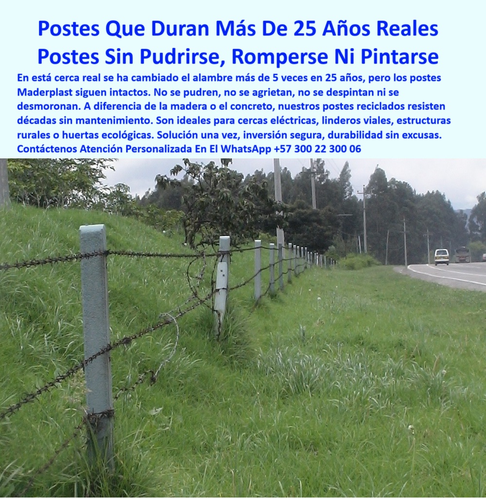 Cercas Perimetrales Postes De Linderos Medianeros Poste Límites Viales Maderplast Poste Maderplast para linderos perimetrales, - #poste-sin-mantenimiento, - Poste plástico sin concreto ni madera, - #poste-plástico-resistente, - Poste estructural sin pintura, - Línea de cercado en terreno húmedo con postes plásticos, - Poste ecológico duradero sin pintura para cerca eléctrica, - Postes reciclados para linderos viales, - Poste reciclado alta durabilidad, - Postes firmes alineados sobre loma verde sin concreto, - Poste duradero para huertas ecológicas, - Postes económicos de larga duración, - Poste de plástico para división de terrenos, - ¿Qué postes duran más de 25 años sin mantenimiento?, - #poste-de-polietileno-reforzado, - Poste reciclado resistente a plagas y rayos UV para finca, - #poste-reciclado-Maderplast, - #poste-para-huerta-ecológica, - Poste recto en terreno inclinado sin soporte adicional, - Poste plástico que aguanta más de 20 años sin mantenimiento, - Postes que no se oxidan ni se parten, - Linderos viales con postes reciclados color gris claro, - ¿Cuál es el poste más resistente para cercas eléctricas?, - #poste-para-cerca-eléctrica, - La imagen muestra una cerca real instalada hace más de 25 años en la vía Cajicá–Zipaquirá, Cundinamarca, con postes plásticos Maderplast que aún siguen firmes y sin mantenimiento. Estos postes reciclados Maderplast no se oxidan, no requieren pintura y resisten el paso del tiempo, siendo la solución definitiva para cercas eléctricas, linderos rurales o estructuras viales. Ideales para quienes buscan una inversión a largo plazo con sostenibilidad, eficiencia y seguridad comprobada., - División de terrenos con postes sin pintura ni daño, - Alambre de púas con postes rectos sin óxido visibles, - #poste-vial-durable, - Cerca antigua con postes como nuevos tras 25 años, - ¿Dónde consigo postes reciclados para linderos rurales?, - Postes plásticos para zonas de lluvia, - ¿Qué poste sirve para terrenos húmedos o inclinados?, - Postes de polietileno reforzado para cercas, - Postes para división predios rurales, - Postes resistentes para vía rural, - Poste plástico instalado sobre pasto junto a carretera rural, - Cercado eléctrico con postes firmes, - Cercado firme con postes plásticos en vía principal, - Postes que no requieren aisladores, - Postes firmes sin necesidad de reemplazo, - #poste-largo-plazo-inversión, - #poste-sin-astillas-ni-corrosión, - Poste sólido para suelos inclinados, - Poste alternativo a madera o concreto para linderos, - Poste reforzado para uso agrícola, - Postes de seguridad vial reciclados, - ¿Qué poste no se pudre ni se rompe?, - Poste ideal para huertas ecológicas, - Poste_Plástico_Linderos_Viales_25_Años_Sin_Mantenimiento_Maderplast_Cajicá.jpg, - #poste-sin-pintura, - Postes para finca sin mantenimiento, - Poste con tensión de alambre sin deformación estructural, - Postes para ganadería y cultivos, - Poste resistente para zonas húmedas, - Postes sin astillas ni corrosión, - Poste plástico sin mantenimiento para cerca eléctrica, - ¿Qué tipo de poste usar en terrenos con humedad permanente? 0 Cerca eléctrica con postes sólidos y durables, - estructura para huerta ecológica, - instalación paso a paso de postes sostenibles, poste reciclado Cercas Perimetrales Postes De Linderos Medianeros Poste Límites Viales Maderplast 0 Cerca eléctrica con postes sólidos y durables estructura para huerta ecológica instalación paso a paso de postes sostenibles poste reciclado Poste Maderplast para linderos perimetrales, - #poste-sin-mantenimiento, - Poste plástico sin concreto ni madera, - #poste-plástico-resistente, - Poste estructural sin pintura, - Línea de cercado en terreno húmedo con postes plásticos, - Poste ecológico duradero sin pintura para cerca eléctrica, - Postes reciclados para linderos viales, - Poste reciclado alta durabilidad, - Postes firmes alineados sobre loma verde sin concreto, - Poste duradero para huertas ecológicas, - Postes económicos de larga duración, - Poste de plástico para división de terrenos, - ¿Qué postes duran más de 25 años sin mantenimiento?, - #poste-de-polietileno-reforzado, - Poste reciclado resistente a plagas y rayos UV para finca, - #poste-reciclado-Maderplast, - #poste-para-huerta-ecológica, - Poste recto en terreno inclinado sin soporte adicional, - Poste plástico que aguanta más de 20 años sin mantenimiento, - Postes que no se oxidan ni se parten, - Linderos viales con postes reciclados color gris claro, - ¿Cuál es el poste más resistente para cercas eléctricas?, - #poste-para-cerca-eléctrica, - La imagen muestra una cerca real instalada hace más de 25 años en la vía Cajicá–Zipaquirá, Cundinamarca, con postes plásticos Maderplast que aún siguen firmes y sin mantenimiento. Estos postes reciclados Maderplast no se oxidan, no requieren pintura y resisten el paso del tiempo, siendo la solución definitiva para cercas eléctricas, linderos rurales o estructuras viales. Ideales para quienes buscan una inversión a largo plazo con sostenibilidad, eficiencia y seguridad comprobada., - División de terrenos con postes sin pintura ni daño, - Alambre de púas con postes rectos sin óxido visibles, - #poste-vial-durable, - Cerca antigua con postes como nuevos tras 25 años, - ¿Dónde consigo postes reciclados para linderos rurales?, - Postes plásticos para zonas de lluvia, - ¿Qué poste sirve para terrenos húmedos o inclinados?, - Postes de polietileno reforzado para cercas, - Postes para división predios rurales, - Postes resistentes para vía rural, - Poste plástico instalado sobre pasto junto a carretera rural, - Cercado eléctrico con postes firmes, - Cercado firme con postes plásticos en vía principal, - Postes que no requieren aisladores, - Postes firmes sin necesidad de reemplazo, - #poste-largo-plazo-inversión, - #poste-sin-astillas-ni-corrosión, - Poste sólido para suelos inclinados, - Poste alternativo a madera o concreto para linderos, - Poste reforzado para uso agrícola, - Postes de seguridad vial reciclados, - ¿Qué poste no se pudre ni se rompe?, - Poste ideal para huertas ecológicas, - Poste_Plástico_Linderos_Viales_25_Años_Sin_Mantenimiento_Maderplast_Cajicá.jpg, - #poste-sin-pintura, - Postes para finca sin mantenimiento, - Poste con tensión de alambre sin deformación estructural, - Postes para ganadería y cultivos, - Poste resistente para zonas húmedas, - Postes sin astillas ni corrosión, - Poste plástico sin mantenimiento para cerca eléctrica, - ¿Qué tipo de poste usar en terrenos con humedad permanente? 0 Cercas Perimetrales Postes De Linderos Medianeros Poste Límites Viales Maderplast 0 Cerca eléctrica con postes sólidos y durables, - estructura para huerta ecológica, - instalación paso a paso de postes sostenibles, poste reciclado