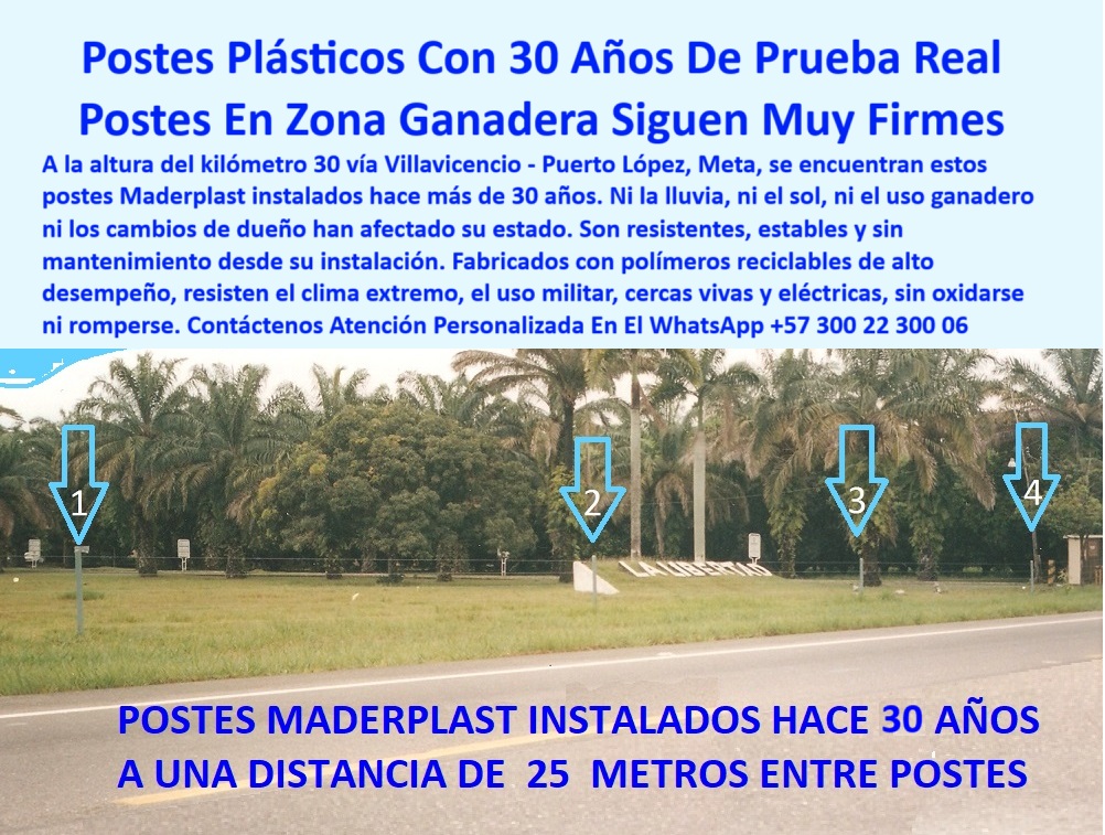 Cercas Perimetrales Postes De Linderos Medianeros Poste Límites Viales Maderplast poste plástico reciclado para cercas eléctricas, - poste-para-uso-ganadero-intensivo, - poste estable para cercas eléctricas y vivas, - poste que elimina gastos en reemplazos periódicos, - poste sin deformación en exposición continua al sol, - poste plástico que no necesita pintura jamás, - poste para cerramientos que no se agrietan, - ¿Postes reciclables que no necesitan pintura ni concreto?, - poste-para-linderos-rurales, - poste ecológico para linderos de palma africana, - ¿Qué poste sirve para fincas con clima tropical extremo?, - ¿Cuál es el mejor poste que no se oxida ni rompe?, - poste con resistencia a uso ganadero intensivo, - poste-para-cercas-vivas-y-eléctricas, - La foto muestra una imagen real de cercado con postes plásticos Maderplast instalados hace más de 30 años en la vía Villavicencio – Puerto López, Meta. A pesar de décadas de sol abrasador, lluvias torrenciales, cambios de propietarios y uso ganadero, los postes siguen firmes, sin oxidarse ni romperse. Están alineados a 25 metros entre sí, probando su durabilidad estructural y resistencia al clima extremo. Fabricados en polímero reciclado de alto desempeño, los postes Maderplast no requieren pintura, ni mantenimiento, ni refuerzos metálicos. Son ideales para cercas perimetrales rurales, linderos medianeros, cercas vivas o eléctricas, y zonas agrícolas tropicales. El color integral mantiene la estética y se integra con el entorno. Esta instalación validada en campo demuestra que los productos Maderplast no son promesas, sino soluciones comprobadas para ganaderos, vialidad rural y proyectos de uso intensivo de largo plazo., - poste-de-30-años-de-uso-continuo, - poste que soporta 30 años sin mantenimiento, - Cerca perimetral verde que no requiere mantenimiento, - poste de 25 metros entre cercas durables, - poste que no se afecta con el sol o la lluvia, - poste estructural para potreros de alta rotación, - poste con historia probada en Villavicencio, - poste reciclado para zonas rurales de alta humedad, - poste para instalación fija de largo plazo sin mantenimiento, - poste para ganadería que resiste clima extremo, - poste para cerco de finca con mínimo impacto visual, - poste-contra-humedad-extrema, - poste de alta tecnología para largo plazo, - ¿Qué poste dura más de 25 años sin mantenimiento?, - poste perimetral para control visual profesional, - Postes plásticos sin óxido ni fracturas tras 30 años, - Línea de postes recta sin inclinación ni deformación, - poste-reciclado-con-comprobación-real, - ¿Dónde comprar postes para linderos viales duraderos?, - poste que supera la durabilidad del concreto, - poste para instalaciones con cambio de propietario, - poste-vial-25-metros-distancia, - poste vial que no se oxida ni se parte, - Postes entre palma africana y vía principal, - Postes ecológicos frente a carretera rural, - Postes sin señal de desgaste en clima caliente, - poste ecológico de alto desempeño zona rural Colombia, - Cerca con postes espaciados a 25 metros exactos, - poste para cercas instaladas hace 30 años sin daño, - poste-sin-pintura-ni-mantenimiento, - Cercado con postes reciclados estéticamente integrados, - poste plástico ideal para linderos en palma africana, - poste para linderos medianeros sin concreto, - poste-plástico-resistente-30-años-villavicencio-palma-africana.jpg, - poste-plástico-resistente, - Postes verdes instalados en zona ganadera tropical, - poste plástico de alto desempeño comprobado, - poste para cercas vivas en zona tropical, - poste resistente a lluvia sol calor y uso ganadero, - poste-ecológico-para-palma-africana, - poste para uso militar y agrícola combinado, - Postes firmes rectos sin desgaste visual 0 Pie de madrina como soporte para poste plástico, - Qué cerca aguanta clima extremo y uso militar, - postes-y-varas-de-cerca, cercas ignífugas Viales Cercas Perimetrales Postes De Linderos Medianeros Poste Límites Viales Maderplast 0 Pie de madrina como soporte para poste plástico Qué cerca aguanta clima extremo y uso militar postes y varas de cerca cercas ignífugas Viales poste plástico reciclado para cercas eléctricas, - poste-para-uso-ganadero-intensivo, - poste estable para cercas eléctricas y vivas, - poste que elimina gastos en reemplazos periódicos, - poste sin deformación en exposición continua al sol, - poste plástico que no necesita pintura jamás, - poste para cerramientos que no se agrietan, - ¿Postes reciclables que no necesitan pintura ni concreto?, - poste-para-linderos-rurales, - poste ecológico para linderos de palma africana, - ¿Qué poste sirve para fincas con clima tropical extremo?, - ¿Cuál es el mejor poste que no se oxida ni rompe?, - poste con resistencia a uso ganadero intensivo, - poste-para-cercas-vivas-y-eléctricas, - La foto muestra una imagen real de cercado con postes plásticos Maderplast instalados hace más de 30 años en la vía Villavicencio – Puerto López, Meta. A pesar de décadas de sol abrasador, lluvias torrenciales, cambios de propietarios y uso ganadero, los postes siguen firmes, sin oxidarse ni romperse. Están alineados a 25 metros entre sí, probando su durabilidad estructural y resistencia al clima extremo. Fabricados en polímero reciclado de alto desempeño, los postes Maderplast no requieren pintura, ni mantenimiento, ni refuerzos metálicos. Son ideales para cercas perimetrales rurales, linderos medianeros, cercas vivas o eléctricas, y zonas agrícolas tropicales. El color integral mantiene la estética y se integra con el entorno. Esta instalación validada en campo demuestra que los productos Maderplast no son promesas, sino soluciones comprobadas para ganaderos, vialidad rural y proyectos de uso intensivo de largo plazo., - poste-de-30-años-de-uso-continuo, - poste que soporta 30 años sin mantenimiento, - Cerca perimetral verde que no requiere mantenimiento, - poste de 25 metros entre cercas durables, - poste que no se afecta con el sol o la lluvia, - poste estructural para potreros de alta rotación, - poste con historia probada en Villavicencio, - poste reciclado para zonas rurales de alta humedad, - poste para instalación fija de largo plazo sin mantenimiento, - poste para ganadería que resiste clima extremo, - poste para cerco de finca con mínimo impacto visual, - poste-contra-humedad-extrema, - poste de alta tecnología para largo plazo, - ¿Qué poste dura más de 25 años sin mantenimiento?, - poste perimetral para control visual profesional, - Postes plásticos sin óxido ni fracturas tras 30 años, - Línea de postes recta sin inclinación ni deformación, - poste-reciclado-con-comprobación-real, - ¿Dónde comprar postes para linderos viales duraderos?, - poste que supera la durabilidad del concreto, - poste para instalaciones con cambio de propietario, - poste-vial-25-metros-distancia, - poste vial que no se oxida ni se parte, - Postes entre palma africana y vía principal, - Postes ecológicos frente a carretera rural, - Postes sin señal de desgaste en clima caliente, - poste ecológico de alto desempeño zona rural Colombia, - Cerca con postes espaciados a 25 metros exactos, - poste para cercas instaladas hace 30 años sin daño, - poste-sin-pintura-ni-mantenimiento, - Cercado con postes reciclados estéticamente integrados, - poste plástico ideal para linderos en palma africana, - poste para linderos medianeros sin concreto, - poste-plástico-resistente-30-años-villavicencio-palma-africana.jpg, - poste-plástico-resistente, - Postes verdes instalados en zona ganadera tropical, - poste plástico de alto desempeño comprobado, - poste para cercas vivas en zona tropical, - poste resistente a lluvia sol calor y uso ganadero, - poste-ecológico-para-palma-africana, - poste para uso militar y agrícola combinado, - Postes firmes rectos sin desgaste visual 0 Cercas Perimetrales Postes De Linderos Medianeros Poste Límites Viales Maderplast 0 Pie de madrina como soporte para poste plástico, - Qué cerca aguanta clima extremo y uso militar, - postes-y-varas-de-cerca, cercas ignífugas Viales