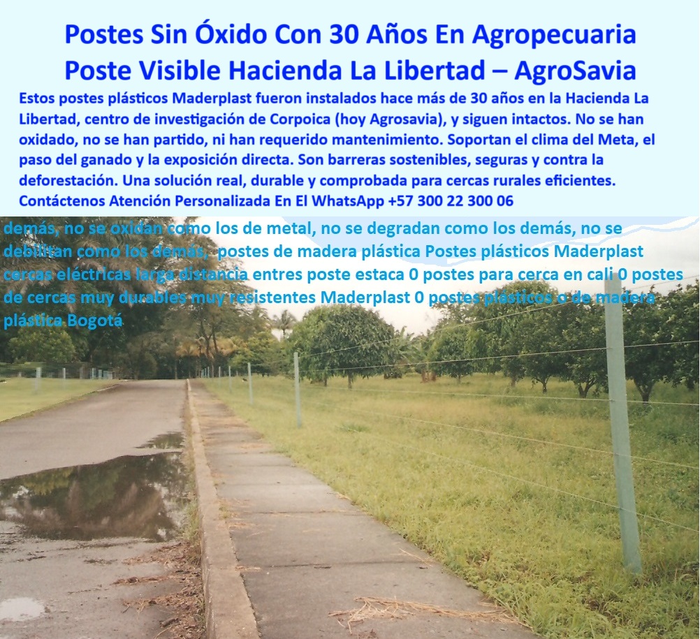 Cercas Perimetrales Postes De Linderos Medianeros Poste Límites Viales Maderplast poste para cerca agropecuaria de alta duración, - postes económicos y duraderos a largo plazo, - cerramiento rural con polímero reciclado resistente, - postes para reemplazo de madera en fincas ganaderas, - ¿Dónde compro postes de cerca que duren más de 20 años?, - cómo hacer cercado sostenible sin concreto ni metal, - instalación de cercas largas sin concreto, - cerca ganadera reciclada sin costos de pintura, - Línea de cerca recta en zona agrícola con humedad, - barreras ecológicas con postes de plástico sólido, - Estructura de cerca para investigación ganadera, - postes-reciclados-para-potreros, - ¿Cómo hacer una cerca eléctrica sin aisladores?, - poste-plástico-contra-deforestación, - poste técnico con soporte para alambre tenso, - Instalación técnica de postes visibles en agrocentro, - postes-para-zona-húmeda, - Postes plásticos intactos después de 30 años sin pintura, - solución contra deforestación con postes reciclados, - postes dieléctricos para instalaciones rurales, - poste para ganadería con más de 30 años en campo real, - cerca eléctrica para zonas húmedas y calientes, - Poste_Sin_Óxido_Instalado_En_Hacienda_La_Libertad_Agrosavia_Maderplast_0.jpg, - postes plásticos sin pudrición para potrero, - cercas-rurales-eficientes, - postes de 30 años sin mantenimiento ni desgaste, - ¿Qué poste usan en zonas ganaderas como el Meta?, - barrera-ecológica-efectiva, - poste de cerca visible y ecológico de plástico, - postes reciclados para centros de investigación, - cercado eficiente con poste en plástico estructural, - Alambres tensos sujetos por poste sin aislador, - La foto muestra una imagen real tomada en la Hacienda La Libertad, hoy conocida como Agrosavia, donde se aprecia una línea de postes plásticos Maderplast instalados hace más de 30 años. Estos postes siguen erguidos, sin óxido, sin pintura, sin agrietamientos y sin ningún tipo de mantenimiento. A lo largo del camino rural, delimitan una cerca firme y perfectamente alineada que ha soportado décadas de humedad, lluvias intensas y uso ganadero continuo. A diferencia del concreto, el metal o la madera, los postes plásticos Maderplast resisten sin deteriorarse ni comprometer la seguridad de la cerca. Son ecológicos, fabricados en polímero reciclado, y actúan como barreras contra la deforestación al eliminar la tala de árboles. Además, son visibles para vehículos y personal en vías agrícolas, mejorando la señalización natural. Esta instalación es testimonio vivo de que la tecnología colombiana ofrece soluciones sostenibles, duraderas y 100% funcionales. Una sola inversión que se paga sola con los años., - cerca-ganadera-sin-mantenimiento, - cercas rurales con postes reciclados sin oxidación, - cerca eléctrica sin aisladores para finca moderna, - postes ideales para suelos húmedos y ganadería, - cerca segura para terrenos ganaderos extensivos, - ¿Qué poste no se oxida ni se parte con el tiempo?, - postes-visibles-para-caminos, - postes sin óxido para fincas rurales, - tecnología-rural-sostenible, - cerca perimetral ecológica con polímero estructural, - Instalación limpia sobre pasto y vía pavimentada, - estructuras rurales con alta durabilidad garantizada, - reemplazo de postes metálicos oxidados en potrero, - ¿Cuál es el mejor poste para clima tropical húmedo?, - Cerramiento eficiente sin concreto ni madera, - cerramientos-agropecuarios, - Postes firmes sin rajaduras visibles al contacto, - postes plásticos resistentes al clima del Meta, - cercado técnico sin oxidación en clima extremo, - Polímero reciclado como sustituto de postes viejos, - postes ecológicos visibles para señalización rural, - Camino rural bordeado por postes sin óxido, - poste para investigación agrícola sin mantenimiento, - postes-plásticos-sin-óxido 0 postes sin oxidación para cercas rurales, - postes-plásticos-contra-la-deforestación, - trucos para alambrado eficiente en potrero, barrera reciclada Cercas Perimetrales Postes De Linderos Medianeros Poste Límites Viales Maderplast 0 postes sin oxidación para cercas rurales postes plásticos contra la deforestación trucos para alambrado eficiente en potrero barrera reciclada poste para cerca agropecuaria de alta duración, - postes económicos y duraderos a largo plazo, - cerramiento rural con polímero reciclado resistente, - postes para reemplazo de madera en fincas ganaderas, - ¿Dónde compro postes de cerca que duren más de 20 años?, - cómo hacer cercado sostenible sin concreto ni metal, - instalación de cercas largas sin concreto, - cerca ganadera reciclada sin costos de pintura, - Línea de cerca recta en zona agrícola con humedad, - barreras ecológicas con postes de plástico sólido, - Estructura de cerca para investigación ganadera, - postes-reciclados-para-potreros, - ¿Cómo hacer una cerca eléctrica sin aisladores?, - poste-plástico-contra-deforestación, - poste técnico con soporte para alambre tenso, - Instalación técnica de postes visibles en agrocentro, - postes-para-zona-húmeda, - Postes plásticos intactos después de 30 años sin pintura, - solución contra deforestación con postes reciclados, - postes dieléctricos para instalaciones rurales, - poste para ganadería con más de 30 años en campo real, - cerca eléctrica para zonas húmedas y calientes, - Poste_Sin_Óxido_Instalado_En_Hacienda_La_Libertad_Agrosavia_Maderplast_0.jpg, - postes plásticos sin pudrición para potrero, - cercas-rurales-eficientes, - postes de 30 años sin mantenimiento ni desgaste, - ¿Qué poste usan en zonas ganaderas como el Meta?, - barrera-ecológica-efectiva, - poste de cerca visible y ecológico de plástico, - postes reciclados para centros de investigación, - cercado eficiente con poste en plástico estructural, - Alambres tensos sujetos por poste sin aislador, - La foto muestra una imagen real tomada en la Hacienda La Libertad, hoy conocida como Agrosavia, donde se aprecia una línea de postes plásticos Maderplast instalados hace más de 30 años. Estos postes siguen erguidos, sin óxido, sin pintura, sin agrietamientos y sin ningún tipo de mantenimiento. A lo largo del camino rural, delimitan una cerca firme y perfectamente alineada que ha soportado décadas de humedad, lluvias intensas y uso ganadero continuo. A diferencia del concreto, el metal o la madera, los postes plásticos Maderplast resisten sin deteriorarse ni comprometer la seguridad de la cerca. Son ecológicos, fabricados en polímero reciclado, y actúan como barreras contra la deforestación al eliminar la tala de árboles. Además, son visibles para vehículos y personal en vías agrícolas, mejorando la señalización natural. Esta instalación es testimonio vivo de que la tecnología colombiana ofrece soluciones sostenibles, duraderas y 100% funcionales. Una sola inversión que se paga sola con los años., - cerca-ganadera-sin-mantenimiento, - cercas rurales con postes reciclados sin oxidación, - cerca eléctrica sin aisladores para finca moderna, - postes ideales para suelos húmedos y ganadería, - cerca segura para terrenos ganaderos extensivos, - ¿Qué poste no se oxida ni se parte con el tiempo?, - postes-visibles-para-caminos, - postes sin óxido para fincas rurales, - tecnología-rural-sostenible, - cerca perimetral ecológica con polímero estructural, - Instalación limpia sobre pasto y vía pavimentada, - estructuras rurales con alta durabilidad garantizada, - reemplazo de postes metálicos oxidados en potrero, - ¿Cuál es el mejor poste para clima tropical húmedo?, - Cerramiento eficiente sin concreto ni madera, - cerramientos-agropecuarios, - Postes firmes sin rajaduras visibles al contacto, - postes plásticos resistentes al clima del Meta, - cercado técnico sin oxidación en clima extremo, - Polímero reciclado como sustituto de postes viejos, - postes ecológicos visibles para señalización rural, - Camino rural bordeado por postes sin óxido, - poste para investigación agrícola sin mantenimiento, - postes-plásticos-sin-óxido 0 Cercas Perimetrales Postes De Linderos Medianeros Poste Límites Viales Maderplast 0 postes sin oxidación para cercas rurales, - postes-plásticos-contra-la-deforestación, - trucos para alambrado eficiente en potrero, barrera reciclada