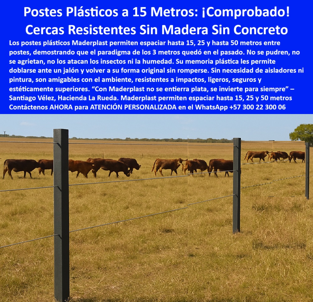Cercas exteriores Cercados De Linderos Poste Plástico Dividir Separar Fincas Maderplast poste plástico para linderos resistentes, - Postes plásticos instalados a 15 metros entre toros de lidia, - ¿Qué poste reemplaza la madera y el concreto?, - poste ideal para terrenos ganaderos amplios, - poste plástico resistente para embestidas de toros, - poste para potrero con bajo mantenimiento, - poste plástico para cercas sin concreto, - poste plástico con memoria de forma, - poste reciclado para cercas agropecuarias, - poste duradero para cercas a 15 metros, - poste-para-potreros-grandes, - poste para cerramiento de finca rural, - poste para ganadería tecnificada sostenible, - ¿Cómo dividir potrero con postes durables?, - ¿Cuál es el mejor poste para ganado de lidia?, - poste plástico para zonas calientes secas, - ¿Postes sin mantenimiento para finca ganadera?, - poste-firme-a-15-metros, - poste con resistencia a termitas y humedad, - poste-sin-aisladores-ganadería, - poste-reciclado-rural, - poste para dividir potreros con seguridad, - ¿Postes ecológicos para ganadería intensiva?, - poste-tecnificado-para-finca, - poste para ganadería de alto impacto, - poste para cercas ganaderas sin pintura, - poste-plastico-cerca-ganado-lidia-girardot-cundinamarca.jpg, - poste para cercas firmes sin concreto, - poste-resistente-para-cercas, - poste sin concreto para cercado rural, - poste-plástico-durable, - poste que resiste embestidas de animales, - poste-ganadero-inteligente, - Poste ecológico para potrero seco sin riesgo de pudrición, - poste sin aisladores para cerca eléctrica ganadera, - Ganado bravo con cerca plástica sin aisladores ni concreto, - poste plástico que reemplaza la madera, - poste sin taladro para cerca eléctrica, - poste plástico resistente para toros de lidia, - Finca ganadera cercada con postes plásticos de alto impacto, - poste plástico ideal para potrero intensivo, - Postes oscuros bien alineados en potrero ganadero seco, - poste que no requiere aisladores eléctricos, - poste-plástico-sin-concreto, - Poste a prueba de impacto para potrero con toros, - poste ecológico para división de potreros, - poste que no se oxida ni se pudre, - poste plástico para ganadería intensiva, - Ganadería tecnificada con postes plásticos reciclables, - poste sin mantenimiento para finca ganadera, - División de linderos ganaderos con postes resistentes, - poste reciclado para uso agropecuario, - Poste plástico firme instalado sin concreto ni pintura, - Los postes plásticos Maderplast instalados en la ganadería de toros de lidia Rocha, en Girardot, Cundinamarca, están diseñados para resistir condiciones extremas sin comprometer seguridad ni funcionalidad. Esta imagen lo prueba: cercas firmes, bien alineadas y sin necesidad de concreto, aisladores o mantenimiento. Mientras los postes de madera se pudren con el tiempo y los de concreto se parten ante impactos o cargas, los postes Maderplast soportan embestidas de toros bravos, rayos UV, lluvias intensas, termitas, hongos, humedad y hasta incendios. Con una separación real de hasta 15 metros entre postes, esta tecnología supera los mitos tradicionales del cercado ganadero, demostrando que no es necesario gastar en más postes, más mano de obra o estructuras complejas. Estos postes de polímero sólido con memoria plástica recuperan su forma ante jalones y tensión, sin astillarse ni rajarse. Son ideales para potreros, cerramientos de linderos, cercas eléctricas permanentes y divisiones de pastoreo rotacional. A diferencia de los postes de madera inmunizada, no liberan químicos al suelo ni contaminan. Aportan una solución ecológica, eficiente y de larga duración: más de 30 años sin reemplazos, sin pintura, sin óxido y sin pudrición. Maderplast transforma fincas ganaderas tradicionales en sistemas tecnificados con menos insumos, más durabilidad y mayor rentabilidad a largo plazo. Inversión inteligente y comprobada por más de 150 clientes satisfechos en toda Colombia., - poste para finca ganadera en Cundinamarca, - Cerca eléctrica ganadera con postes plásticos firmes, - poste-plástico-para-toros 0 Hay postes plásticos resistentes a impactos de Linderos, - 00 Cercas exteriores Cercados De Linderos Poste Plástico Dividir Separar Fincas Maderplast 0 Hay postes plásticos resistentes a impactos de Linderos 00 Cercas exteriores Cercados De Linderos Poste Plástico Dividir Separar Fincas Maderplast poste plástico para linderos resistentes, - Postes plásticos instalados a 15 metros entre toros de lidia, - ¿Qué poste reemplaza la madera y el concreto?, - poste ideal para terrenos ganaderos amplios, - poste plástico resistente para embestidas de toros, - poste para potrero con bajo mantenimiento, - poste plástico para cercas sin concreto, - poste plástico con memoria de forma, - poste reciclado para cercas agropecuarias, - poste duradero para cercas a 15 metros, - poste-para-potreros-grandes, - poste para cerramiento de finca rural, - poste para ganadería tecnificada sostenible, - ¿Cómo dividir potrero con postes durables?, - ¿Cuál es el mejor poste para ganado de lidia?, - poste plástico para zonas calientes secas, - ¿Postes sin mantenimiento para finca ganadera?, - poste-firme-a-15-metros, - poste con resistencia a termitas y humedad, - poste-sin-aisladores-ganadería, - poste-reciclado-rural, - poste para dividir potreros con seguridad, - ¿Postes ecológicos para ganadería intensiva?, - poste-tecnificado-para-finca, - poste para ganadería de alto impacto, - poste para cercas ganaderas sin pintura, - poste-plastico-cerca-ganado-lidia-girardot-cundinamarca.jpg, - poste para cercas firmes sin concreto, - poste-resistente-para-cercas, - poste sin concreto para cercado rural, - poste-plástico-durable, - poste que resiste embestidas de animales, - poste-ganadero-inteligente, - Poste ecológico para potrero seco sin riesgo de pudrición, - poste sin aisladores para cerca eléctrica ganadera, - Ganado bravo con cerca plástica sin aisladores ni concreto, - poste plástico que reemplaza la madera, - poste sin taladro para cerca eléctrica, - poste plástico resistente para toros de lidia, - Finca ganadera cercada con postes plásticos de alto impacto, - poste plástico ideal para potrero intensivo, - Postes oscuros bien alineados en potrero ganadero seco, - poste que no requiere aisladores eléctricos, - poste-plástico-sin-concreto, - Poste a prueba de impacto para potrero con toros, - poste ecológico para división de potreros, - poste que no se oxida ni se pudre, - poste plástico para ganadería intensiva, - Ganadería tecnificada con postes plásticos reciclables, - poste sin mantenimiento para finca ganadera, - División de linderos ganaderos con postes resistentes, - poste reciclado para uso agropecuario, - Poste plástico firme instalado sin concreto ni pintura, - Los postes plásticos Maderplast instalados en la ganadería de toros de lidia Rocha, en Girardot, Cundinamarca, están diseñados para resistir condiciones extremas sin comprometer seguridad ni funcionalidad. Esta imagen lo prueba: cercas firmes, bien alineadas y sin necesidad de concreto, aisladores o mantenimiento. Mientras los postes de madera se pudren con el tiempo y los de concreto se parten ante impactos o cargas, los postes Maderplast soportan embestidas de toros bravos, rayos UV, lluvias intensas, termitas, hongos, humedad y hasta incendios. Con una separación real de hasta 15 metros entre postes, esta tecnología supera los mitos tradicionales del cercado ganadero, demostrando que no es necesario gastar en más postes, más mano de obra o estructuras complejas. Estos postes de polímero sólido con memoria plástica recuperan su forma ante jalones y tensión, sin astillarse ni rajarse. Son ideales para potreros, cerramientos de linderos, cercas eléctricas permanentes y divisiones de pastoreo rotacional. A diferencia de los postes de madera inmunizada, no liberan químicos al suelo ni contaminan. Aportan una solución ecológica, eficiente y de larga duración: más de 30 años sin reemplazos, sin pintura, sin óxido y sin pudrición. Maderplast transforma fincas ganaderas tradicionales en sistemas tecnificados con menos insumos, más durabilidad y mayor rentabilidad a largo plazo. Inversión inteligente y comprobada por más de 150 clientes satisfechos en toda Colombia., - poste para finca ganadera en Cundinamarca, - Cerca eléctrica ganadera con postes plásticos firmes, - poste-plástico-para-toros 0 Hay postes plásticos resistentes a impactos de Linderos, - 00