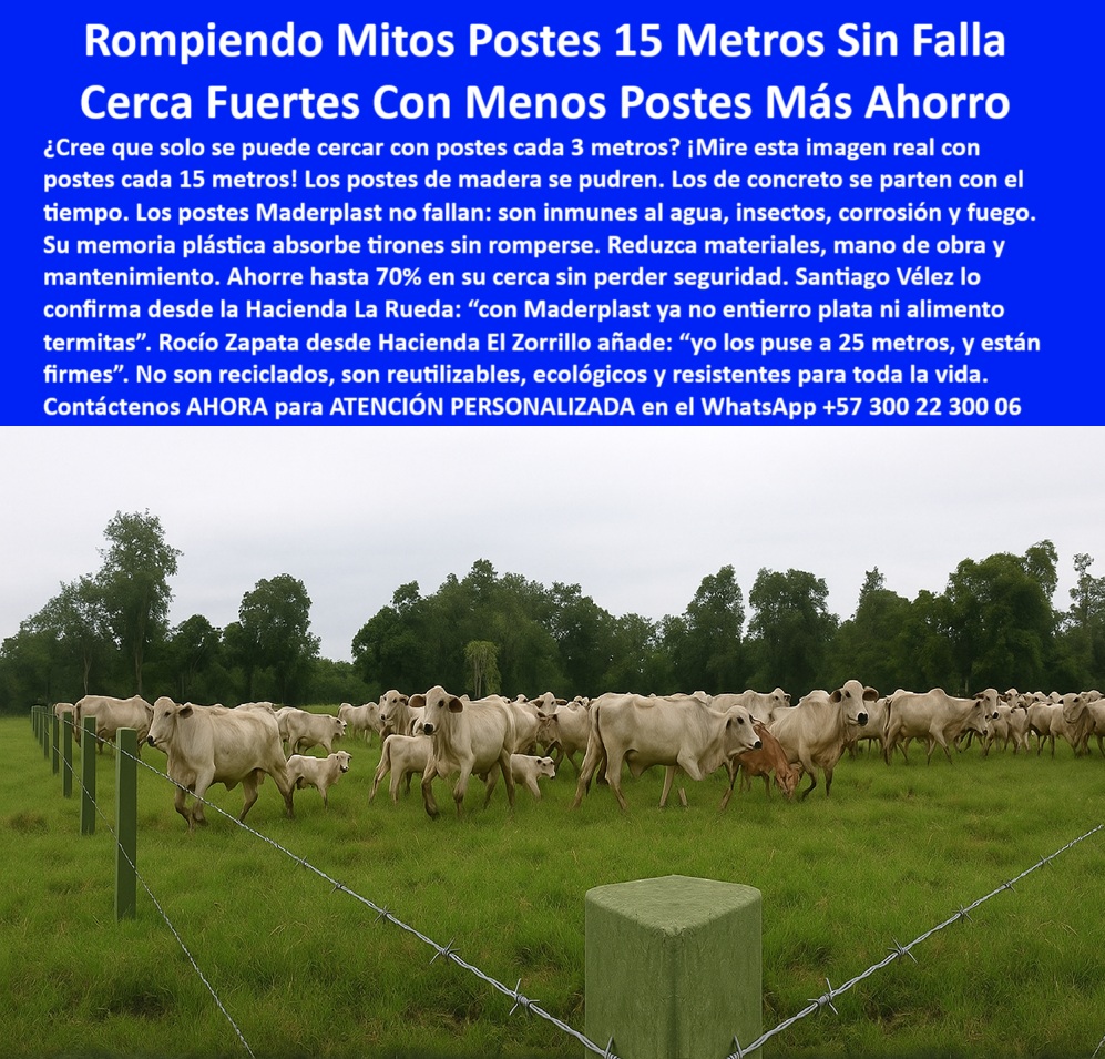 cerco para ganado que no requiere reemplazos, - instalación-de-cercas-duraderas, - poste-reutilizable-maderplast, - Cercado rural eficiente sin concreto ni aisladores, - poste duradero para terrenos húmedos y firmes, - Línea de postes verdes delimitando finca en La Dorada, - sistema de cercas con postes ecológicos reutilizables, - Cerca ganadera de 15 metros entre postes reutilizables, - finca-la-idalia-la-dorada, - poste Maderplast instalado en La Dorada Caldas, - poste para cercas que no se oxida ni parte, - poste sólido que resiste fuego y termitas, - ahorro en mano de obra en cercado rural, - ¿Dónde comprar postes Maderplast en Caldas?, - cerca de potrero sin necesidad de concreto, - En esta imagen real tomada en la Finca La Idalia en La Dorada, Caldas – Colombia, se demuestra cómo los postes plásticos Maderplast permiten instalar cercas ganaderas firmes a 15 metros de distancia sin fallos. Estos postes Maderplast son resistentes a la humedad, fuego, insectos y no requieren mantenimiento. Gracias a su memoria plástica y durabilidad comprobada, ofrecen una solución económica, ecológica y segura para dividir fincas con menos postes y mayor eficiencia., - poste-ecológico-para-ganado, - cerca-ganadera-sin-mantenimiento, - Poste plástico Maderplast instalado en finca ganadera Caldas, - poste-plastico-cercas-ganaderas-la-dorada-caldas-maderplast.jpg, - Sistema de cercado ecológico y firme en potrero real, - poste estructural para linderos permanentes, - postes-maderplast-en-caldas, - cercado con postes de alta tensión ganadera, - postes plásticos sólidos para cercas a 15 metros, - cercas para ganado resistentes a humedad y fuego, - Poste Maderplast sin oxidación rodeando ganado en finca, - poste plástico Maderplast finca La Idalia Caldas, - linderos-rurales-con-postes, - poste dieléctrico para potrero rotacional, - cerca para finca con poste de plástico verde, - poste ecológico para finca ganadera Caldas, - ¿Qué poste puedo usar para cerca sin mantenimiento?, - sistema-de-cercado-eficiente, - ¿Cómo cercar una finca con postes cada 15 metros?, - poste que no se tuerce con el tiempo, - cercado rural con postes sin aisladores, - poste plástico sin fallas para división rural, - Poste recto firme visible en linderos de finca, - cercas eficientes con postes a 15 metros, - sistema ganadero con cerca plástica reutilizable, - poste plástico para dividir fincas ganaderas, - poste plástico sin pintura ni corrosión, - Poste Maderplast reutilizable en cercado de ganado, - cerca ganadera económica sin mantenimiento, - Campo abierto cercado con poste plástico estructural, - instalación de postes a 15 metros ganadería, - cerca-sin-óxido-ni-pudrición, - poste-plástico-para-potreros, - sistema de cercado con bajo costo operativo, - ¿Cuál es el mejor poste para dividir fincas ganaderas?, - poste dieléctrico Maderplast para potrero rotacional, - postes plásticos reutilizables para linderos, - Finca vallada con postes dieléctricos ecológicos, - cerca rural ecológica con postes sin óxido, - cerca resistente con postes de plástico sólido, - ¿Cuánto duran los postes plásticos para potrero? Cercas exteriores Cercados De Linderos Poste Plástico Dividir Separar Fincas Maderplast 0 consejos para instalar poste de cerca sin fallas Linderos poste reutilizable cerca Linderos Existen postes plásticos que reduzcan el gasto cerco para ganado que no requiere reemplazos, - instalación-de-cercas-duraderas, - poste-reutilizable-maderplast, - Cercado rural eficiente sin concreto ni aisladores, - poste duradero para terrenos húmedos y firmes, - Línea de postes verdes delimitando finca en La Dorada, - sistema de cercas con postes ecológicos reutilizables, - Cerca ganadera de 15 metros entre postes reutilizables, - finca-la-idalia-la-dorada, - poste Maderplast instalado en La Dorada Caldas, - poste para cercas que no se oxida ni parte, - poste sólido que resiste fuego y termitas, - ahorro en mano de obra en cercado rural, - ¿Dónde comprar postes Maderplast en Caldas?, - cerca de potrero sin necesidad de concreto, - En esta imagen real tomada en la Finca La Idalia en La Dorada, Caldas – Colombia, se demuestra cómo los postes plásticos Maderplast permiten instalar cercas ganaderas firmes a 15 metros de distancia sin fallos. Estos postes Maderplast son resistentes a la humedad, fuego, insectos y no requieren mantenimiento. Gracias a su memoria plástica y durabilidad comprobada, ofrecen una solución económica, ecológica y segura para dividir fincas con menos postes y mayor eficiencia., - poste-ecológico-para-ganado, - cerca-ganadera-sin-mantenimiento, - Poste plástico Maderplast instalado en finca ganadera Caldas, - poste-plastico-cercas-ganaderas-la-dorada-caldas-maderplast.jpg, - Sistema de cercado ecológico y firme en potrero real, - poste estructural para linderos permanentes, - postes-maderplast-en-caldas, - cercado con postes de alta tensión ganadera, - postes plásticos sólidos para cercas a 15 metros, - cercas para ganado resistentes a humedad y fuego, - Poste Maderplast sin oxidación rodeando ganado en finca, - poste plástico Maderplast finca La Idalia Caldas, - linderos-rurales-con-postes, - poste dieléctrico para potrero rotacional, - cerca para finca con poste de plástico verde, - poste ecológico para finca ganadera Caldas, - ¿Qué poste puedo usar para cerca sin mantenimiento?, - sistema-de-cercado-eficiente, - ¿Cómo cercar una finca con postes cada 15 metros?, - poste que no se tuerce con el tiempo, - cercado rural con postes sin aisladores, - poste plástico sin fallas para división rural, - Poste recto firme visible en linderos de finca, - cercas eficientes con postes a 15 metros, - sistema ganadero con cerca plástica reutilizable, - poste plástico para dividir fincas ganaderas, - poste plástico sin pintura ni corrosión, - Poste Maderplast reutilizable en cercado de ganado, - cerca ganadera económica sin mantenimiento, - Campo abierto cercado con poste plástico estructural, - instalación de postes a 15 metros ganadería, - cerca-sin-óxido-ni-pudrición, - poste-plástico-para-potreros, - sistema de cercado con bajo costo operativo, - ¿Cuál es el mejor poste para dividir fincas ganaderas?, - poste dieléctrico Maderplast para potrero rotacional, - postes plásticos reutilizables para linderos, - Finca vallada con postes dieléctricos ecológicos, - cerca rural ecológica con postes sin óxido, - cerca resistente con postes de plástico sólido, - ¿Cuánto duran los postes plásticos para potrero? 0 Cercas exteriores Cercados De Linderos Poste Plástico Dividir Separar Fincas Maderplast 0 consejos para instalar poste de cerca sin fallas Linderos, - poste reutilizable cerca Linderos, - Existen postes plásticos que reduzcan el gasto