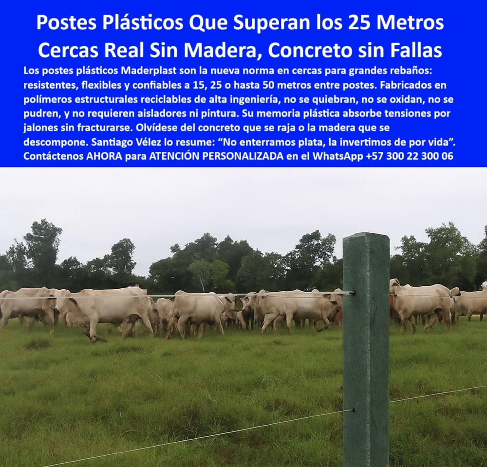 Cercas exteriores Cercados De Linderos Poste Plástico Dividir Separar Fincas Maderplast poste plástico resistente para dividir potreros, - poste plástico para dividir potreros con ganado, - poste-plastico-linderos-25-metros-finca-el-zorrillo.jpg, - poste sólido que no se pudre ni se parte, - ¿Qué poste de plástico es mejor que el concreto?, - poste ecológico de alta ingeniería rural, - poste-sin-pintura-ni-oxidación, - poste-para-cerca-eléctrica-ganadera, - poste que no se oxida ni requiere pintura, - poste rígido que no se deforma con jalones, - Poste sin óxido ni pintura tras años de instalación, - La imagen muestra un poste plástico Maderplast instalado en la finca El Zorrillo de Rocío Zapata, en Girardot, Cundinamarca, con más de 20 metros de separación respecto al siguiente poste, lo que demuestra su resistencia estructural sin necesidad de soporte intermedio. Diseñados para grandes rebaños, los postes Maderplast permiten construir cercas ganaderas sin concreto ni madera, eliminando problemas de pudrición, fractura, óxido o mantenimiento. Su polímero técnico reciclado resiste lluvias, calor, tensión del alambre y embestidas sin deformarse. Este sistema sustituye con eficacia el uso de postes convencionales, ahorra hasta un 70 % en materiales y mano de obra, y ofrece una solución ecológica y rentable que permanece intacta por décadas. Su memoria plástica permite soportar jalones sin partirse, y su instalación es limpia y precisa, ideal para linderos rurales, potreros extensos y divisiones eléctricas modernas. Maderplast convierte su inversión en una cerca firme, estética y para toda la vida. Con Maderplast, invierta una vez, disfrute para siempre., - ¿Cuál poste sirve para dividir fincas grandes?, - poste eléctrico con separación de 25 metros, - poste-sin-mantenimiento-ni-reemplazo, - poste-tecnológico-para-fincas, - poste para ganadería intensiva con mínima inversión, - poste de polímero estructural para linderos rurales, - poste reciclado para dividir fincas sin oxido, - poste-plástico-de-larga-duración, - poste tecnificado para proyectos rurales, - poste-para-reemplazar-madera-y-concreto, - poste económico para uso ganadero prolongado, - poste para cercas de más de 20 metros, - poste sin pintura ni aisladores para potrero, - poste que reemplaza concreto y madera sin falla, - poste-plástico-para-linderos-grandes, - poste de polímero para cercas definitivas, - ¿Qué poste para cerca eléctrica no se oxida?, - poste firme para terrenos planos o irregulares, - poste resistente para rebaños grandes en zonas húmedas, - poste de uso permanente en cercas agrícolas, - poste plástico estructural para zonas ganaderas, - poste para cercas con más de 20 metros de distancia, - Poste plástico Maderplast firme en finca ganadera de Girardot, - Cerca eléctrica con separación superior a 20 metros, - poste plástico anti humedad sin mantenimiento, - División de ganado con postes plásticos reciclados, - Poste firme y recto en pastizales húmedos sin deformación, - poste confiable para cercas visibles desde lejos, - poste plástico para cercas ecológicas y rentables, - ¿Dónde comprar postes durables para linderos?, - poste con memoria plástica para tensión ganadera, - poste-para-linderos-de-ganado, - poste de cerca sin pintura ni pudrición, - Poste único visible en imagen por distancia de instalación, - Cercado para rebaños con poste de alta ingeniería, - poste-de-polímero-resistente, - poste-instalado-en-finca-de-Girardot, - Poste reciclado en finca El Zorrillo Rocío Zapata, - poste plástico para linderos agrícolas sin mantenimiento, - Poste visible entre pasturas verdes de alto rendimiento, - ¿Qué poste aguanta 20 metros sin caerse?, - Cercado de potrero amplio con postes sin mantenimiento, - poste para cercas de ganado sin reemplazo, - poste técnico sin deterioro para linderos, - poste eléctrico para grandes distancias entre cercas 0 poste plástico eléctrico Linderos, - Qué postes no se pudren ni necesitan mantenimiento Linderos, - p00 Cercas exteriores Cercados De Linderos Poste Plástico Dividir Separar Fincas Maderplast 0 poste plástico eléctrico Linderos Qué postes no se pudren ni necesitan mantenimiento Linderos p00 poste plástico resistente para dividir potreros, - poste plástico para dividir potreros con ganado, - poste-plastico-linderos-25-metros-finca-el-zorrillo.jpg, - poste sólido que no se pudre ni se parte, - ¿Qué poste de plástico es mejor que el concreto?, - poste ecológico de alta ingeniería rural, - poste-sin-pintura-ni-oxidación, - poste-para-cerca-eléctrica-ganadera, - poste que no se oxida ni requiere pintura, - poste rígido que no se deforma con jalones, - Poste sin óxido ni pintura tras años de instalación, - La imagen muestra un poste plástico Maderplast instalado en la finca El Zorrillo de Rocío Zapata, en Girardot, Cundinamarca, con más de 20 metros de separación respecto al siguiente poste, lo que demuestra su resistencia estructural sin necesidad de soporte intermedio. Diseñados para grandes rebaños, los postes Maderplast permiten construir cercas ganaderas sin concreto ni madera, eliminando problemas de pudrición, fractura, óxido o mantenimiento. Su polímero técnico reciclado resiste lluvias, calor, tensión del alambre y embestidas sin deformarse. Este sistema sustituye con eficacia el uso de postes convencionales, ahorra hasta un 70 % en materiales y mano de obra, y ofrece una solución ecológica y rentable que permanece intacta por décadas. Su memoria plástica permite soportar jalones sin partirse, y su instalación es limpia y precisa, ideal para linderos rurales, potreros extensos y divisiones eléctricas modernas. Maderplast convierte su inversión en una cerca firme, estética y para toda la vida. Con Maderplast, invierta una vez, disfrute para siempre., - ¿Cuál poste sirve para dividir fincas grandes?, - poste eléctrico con separación de 25 metros, - poste-sin-mantenimiento-ni-reemplazo, - poste-tecnológico-para-fincas, - poste para ganadería intensiva con mínima inversión, - poste de polímero estructural para linderos rurales, - poste reciclado para dividir fincas sin oxido, - poste-plástico-de-larga-duración, - poste tecnificado para proyectos rurales, - poste-para-reemplazar-madera-y-concreto, - poste económico para uso ganadero prolongado, - poste para cercas de más de 20 metros, - poste sin pintura ni aisladores para potrero, - poste que reemplaza concreto y madera sin falla, - poste-plástico-para-linderos-grandes, - poste de polímero para cercas definitivas, - ¿Qué poste para cerca eléctrica no se oxida?, - poste firme para terrenos planos o irregulares, - poste resistente para rebaños grandes en zonas húmedas, - poste de uso permanente en cercas agrícolas, - poste plástico estructural para zonas ganaderas, - poste para cercas con más de 20 metros de distancia, - Poste plástico Maderplast firme en finca ganadera de Girardot, - Cerca eléctrica con separación superior a 20 metros, - poste plástico anti humedad sin mantenimiento, - División de ganado con postes plásticos reciclados, - Poste firme y recto en pastizales húmedos sin deformación, - poste confiable para cercas visibles desde lejos, - poste plástico para cercas ecológicas y rentables, - ¿Dónde comprar postes durables para linderos?, - poste con memoria plástica para tensión ganadera, - poste-para-linderos-de-ganado, - poste de cerca sin pintura ni pudrición, - Poste único visible en imagen por distancia de instalación, - Cercado para rebaños con poste de alta ingeniería, - poste-de-polímero-resistente, - poste-instalado-en-finca-de-Girardot, - Poste reciclado en finca El Zorrillo Rocío Zapata, - poste plástico para linderos agrícolas sin mantenimiento, - Poste visible entre pasturas verdes de alto rendimiento, - ¿Qué poste aguanta 20 metros sin caerse?, - Cercado de potrero amplio con postes sin mantenimiento, - poste para cercas de ganado sin reemplazo, - poste técnico sin deterioro para linderos, - poste eléctrico para grandes distancias entre cercas Cercas exteriores Cercados De Linderos Poste Plástico Dividir Separar Fincas Maderplast 0 poste plástico eléctrico Linderos, - Qué postes no se pudren ni necesitan mantenimiento Linderos, - p00