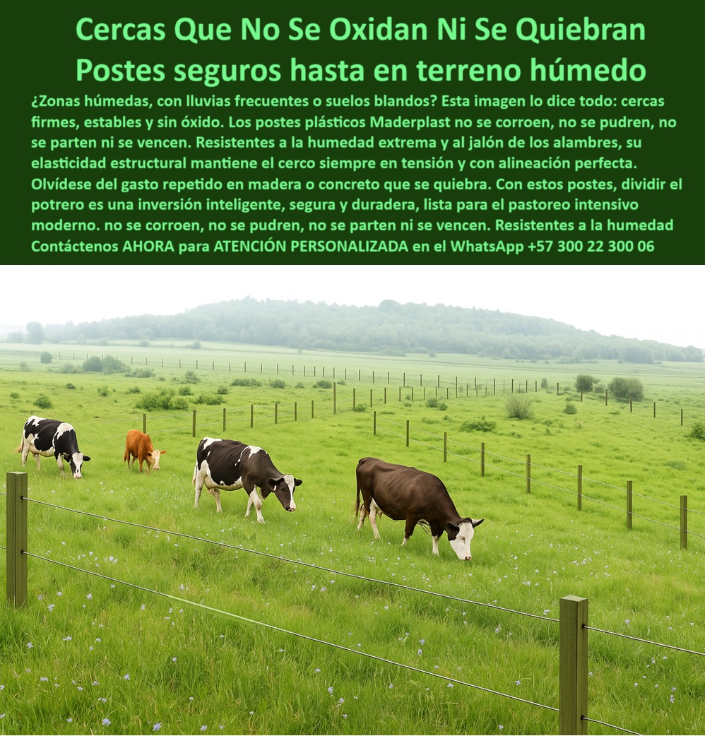 Cómo Dividir Potrero Para Ganado Con Cercas Eléctricas Postes Cercados Maderplast poste dieléctrico para división de potreros ganaderos, - poste para cerca ganadera resistente a humedad intensa, - poste plástico sin deformación por tensión de alambres, - Esta imagen muestra una división de potrero en terreno húmedo utilizando postes plásticos Maderplast, perfectamente alineados y sin signos de oxidación o deterioro. Los postes Maderplast resisten lluvias prolongadas, impactos de ganado, tensión de alambres y condiciones extremas sin necesidad de mantenimiento. Son ideales para cercas eléctricas rurales en zonas húmedas, donde la durabilidad, firmeza y sostenibilidad son clave. Fabricados en material reciclado, estos postes ecológicos garantizan 30 años de uso eficiente, seguro y económico. La mejor inversión para dividir potreros sin reemplazos., - poste firme para división sin refuerzos intermedios, - Cerco ganadero en clima húmedo con postes resistentes, - poste estructural reciclado para cercas eléctricas rurales, - poste ecológico para división de fincas húmedas, - poste de polipropileno para alambre rural eléctrico, - poste-plástico-para-ganado-bravo, - poste-para-alambrado-en-suelos-húmedos, - poste-sin-óxido-para-pastoreo-intensivo, - Postes anticorrosivos alineados sobre pasto verde húmedo, - poste dieléctrico sin aisladores para cerca ganadera, - Instalación de cerca plástica sobre suelo blando rural, - ¿Qué poste eléctrico sin mantenimiento sirve para potrero intensivo?, - poste técnico para sistemas rurales con cercado eléctrico, - poste reciclado para pastoreo intensivo sin óxido, - poste-reciclado-para-cercas-eléctricas, - Pradera ganadera cercada con postes dieléctricos sin pintura, - Cerca eléctrica ganadera instalada con postes verdes reciclables, - Imagen rural con ganado pastando y cerca bien alineada, - poste que no necesita pintura para durar 30 años, - Postes reciclables resistentes al agua para cercas eléctricas, - poste-plástico-para-potreros-húmedos, - División de potrero con postes plásticos firmes y rectos, - poste-ecológico-para-dividir-fincas, - poste-duradero-sin-mantenimiento, - Recomiéndame un poste plástico para terrenos húmedos ganaderos, - poste duradero para cercas eléctricas con mínima inversión, - poste-dieléctrico-para-terrenos-blandos, - ¿Qué poste para cerca eléctrica dura más de 20 años?, - poste-plastico-para-terrenos-humedos-ganaderia-sin-oxido.jpg, - ¿Cuál es el mejor poste plástico para fincas húmedas?, - poste para dividir potrero con poco mantenimiento, - Dame opciones de poste dieléctrico que no se oxida ni parte, - poste que no se parte en clima extremo, - poste-resistente-a-humedad-extrema, - poste plástico para terrenos húmedos sin oxidación, - ¿Qué poste me sirve para dividir potreros con mucha lluvia?, - Pasto húmedo cercado con poste verde sin mantenimiento, - ¿Qué poste usar en terreno blando con ganado fuerte?, - poste que no se oxida en zonas tropicales, - poste para zonas lluviosas sin mantenimiento frecuente, - Postes ecológicos alineados para ganado en zona lluviosa, - poste que no se vence en lluvias prolongadas, - poste para dividir lotes ganaderos de forma segura, - poste plástico con memoria elástica estructural, - poste firme para suelos blandos con ganado bravo, - Sistema eléctrico para dividir ganado con poste reciclado, - poste anticorrosivo para cercas eléctricas sostenibles, - ¿Cuál es el poste más durable para dividir fincas rurales?, - poste-verde-para-cercas-sostenibles, - poste para alambres tensados en suelos inestables, - poste para rotación ganadera con humedad elevada, - poste para praderas húmedas con animales pesados, - ¿Dónde venden postes que no se oxidan ni se parten? 0 Qué postes no se oxidan en zonas húmedas Dividir Potrero, - poste-económico-para-f Dividir Potrero, - poste plástico Dividir Potrero, - estructuras PP Cómo Dividir Potrero Para Ganado Con Cercas Eléctricas Postes Cercados Maderplast 0 Qué postes no se oxidan en zonas húmedas Dividir Potrero poste económico para f Dividir Potrero poste plástico Dividir Potrero estructuras PP poste dieléctrico para división de potreros ganaderos, - poste para cerca ganadera resistente a humedad intensa, - poste plástico sin deformación por tensión de alambres, - Esta imagen muestra una división de potrero en terreno húmedo utilizando postes plásticos Maderplast, perfectamente alineados y sin signos de oxidación o deterioro. Los postes Maderplast resisten lluvias prolongadas, impactos de ganado, tensión de alambres y condiciones extremas sin necesidad de mantenimiento. Son ideales para cercas eléctricas rurales en zonas húmedas, donde la durabilidad, firmeza y sostenibilidad son clave. Fabricados en material reciclado, estos postes ecológicos garantizan 30 años de uso eficiente, seguro y económico. La mejor inversión para dividir potreros sin reemplazos., - poste firme para división sin refuerzos intermedios, - Cerco ganadero en clima húmedo con postes resistentes, - poste estructural reciclado para cercas eléctricas rurales, - poste ecológico para división de fincas húmedas, - poste de polipropileno para alambre rural eléctrico, - poste-plástico-para-ganado-bravo, - poste-para-alambrado-en-suelos-húmedos, - poste-sin-óxido-para-pastoreo-intensivo, - Postes anticorrosivos alineados sobre pasto verde húmedo, - poste dieléctrico sin aisladores para cerca ganadera, - Instalación de cerca plástica sobre suelo blando rural, - ¿Qué poste eléctrico sin mantenimiento sirve para potrero intensivo?, - poste técnico para sistemas rurales con cercado eléctrico, - poste reciclado para pastoreo intensivo sin óxido, - poste-reciclado-para-cercas-eléctricas, - Pradera ganadera cercada con postes dieléctricos sin pintura, - Cerca eléctrica ganadera instalada con postes verdes reciclables, - Imagen rural con ganado pastando y cerca bien alineada, - poste que no necesita pintura para durar 30 años, - Postes reciclables resistentes al agua para cercas eléctricas, - poste-plástico-para-potreros-húmedos, - División de potrero con postes plásticos firmes y rectos, - poste-ecológico-para-dividir-fincas, - poste-duradero-sin-mantenimiento, - Recomiéndame un poste plástico para terrenos húmedos ganaderos, - poste duradero para cercas eléctricas con mínima inversión, - poste-dieléctrico-para-terrenos-blandos, - ¿Qué poste para cerca eléctrica dura más de 20 años?, - poste-plastico-para-terrenos-humedos-ganaderia-sin-oxido.jpg, - ¿Cuál es el mejor poste plástico para fincas húmedas?, - poste para dividir potrero con poco mantenimiento, - Dame opciones de poste dieléctrico que no se oxida ni parte, - poste que no se parte en clima extremo, - poste-resistente-a-humedad-extrema, - poste plástico para terrenos húmedos sin oxidación, - ¿Qué poste me sirve para dividir potreros con mucha lluvia?, - Pasto húmedo cercado con poste verde sin mantenimiento, - ¿Qué poste usar en terreno blando con ganado fuerte?, - poste que no se oxida en zonas tropicales, - poste para zonas lluviosas sin mantenimiento frecuente, - Postes ecológicos alineados para ganado en zona lluviosa, - poste que no se vence en lluvias prolongadas, - poste para dividir lotes ganaderos de forma segura, - poste plástico con memoria elástica estructural, - poste firme para suelos blandos con ganado bravo, - Sistema eléctrico para dividir ganado con poste reciclado, - poste anticorrosivo para cercas eléctricas sostenibles, - ¿Cuál es el poste más durable para dividir fincas rurales?, - poste-verde-para-cercas-sostenibles, - poste para alambres tensados en suelos inestables, - poste para rotación ganadera con humedad elevada, - poste para praderas húmedas con animales pesados, - ¿Dónde venden postes que no se oxidan ni se parten? 0 Cómo Dividir Potrero Para Ganado Con Cercas Eléctricas Postes Cercados Maderplast 0 Qué postes no se oxidan en zonas húmedas Dividir Potrero, - poste-económico-para-f Dividir Potrero, - poste plástico Dividir Potrero, - estructuras PP
