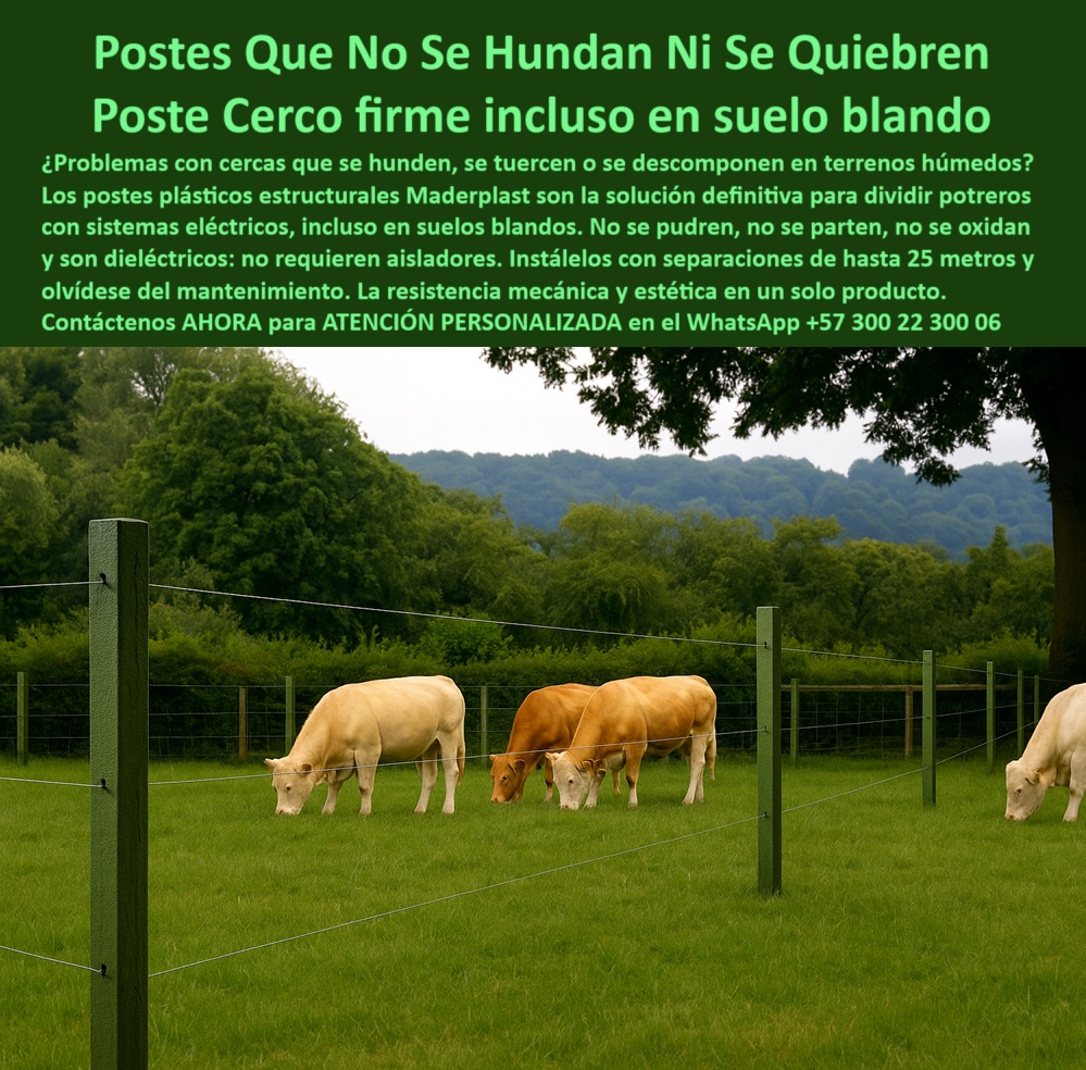 Cómo Dividir Potrero Para Ganado Con Cercas Eléctricas Postes Cercados Maderplast poste de largo alcance sin deformación, - ¿Dónde comprar poste plástico resistente al agua?, - poste-para-ganado-intensivo, - Recomiéndame un poste para cerca eléctrica sin mantenimiento., - poste sin mantenimiento para potrero dividido, - poste-dieléctrico-para-ganadería, - poste ideal para terrenos húmedos e inclinados, - poste dieléctrico para cercado de ganado, - Esta imagen muestra una instalación ganadera profesional con postes plásticos estructurales Maderplast, diseñados para soportar cercas eléctricas incluso en suelos blandos. Los postes Maderplast no se hunden, no se oxidan ni se deforman, y están fabricados con polímero reciclado resistente al agua, al sol, a la humedad y al impacto del ganado. Ideales para terrenos húmedos, divisiones de potreros y sistemas de pastoreo intensivo. No requieren aisladores, pintura ni mantenimiento, lo que los convierte en la mejor solución para cercamientos rurales eficientes y sostenibles., - poste plástico para suelo blando ganadero, - poste ecológico reforzado para zonas rurales, - poste reciclado fuerte para cercas rurales, - poste-para-dividir-pasturas, - poste-plastico-estructural-suelo-blando-cerca-electrica-ganado-maderplast.jpg, - poste que no se tuerce ni se rompe, - poste-sin-mantenimiento-rural, - poste resistente a humedad sin oxidación, - División de potrero con postes firmes y eléctricos verdes, - Dame una opción de poste plástico dieléctrico para potreros húmedos., - poste sin pintura para finca rural, - poste sin pudrición para terrenos blandos, - ¿Cuál es el mejor poste para cercas eléctricas sin aisladores?, - poste-sin-pintura-ni-óxido, - poste técnico para sistemas rotacionales, - poste-plástico-para-suelo-blando, - Sistema rotacional con postes sin oxidación ni pintura, - poste-para-cercas-eléctricas, - Cercado rural con postes Maderplast en suelos blandos, - poste plástico verde para cerco perimetral, - poste-verde-para-potreros, - poste-para-zonas-húmedas, - poste largo sin refuerzos intermedios, - poste para ganado intensivo en pastoreo, - Ganado pastando cercado con postes plásticos estructurales, - poste sostenible para división de terrenos, - poste resistente a impacto de ganado, - poste plástico para clima húmedo extremo, - Postes dieléctricos alineados sin refuerzos en terreno húmedo, - ¿Cuál es el mejor poste estructural para suelo blando ganadero?, - ¿Qué poste no se oxida ni se hunde en el barro?, - poste estructural dieléctrico para fincas, - Cerca perimetral ganadera con postes de polímero sólido, - ¿Qué poste plástico no necesita aisladores para cercas rurales?, - ¿Qué poste resiste humedad y no se deforma en terrenos blandos?, - ¿Qué poste usar en suelos húmedos para ganado?, - Poste plástico verde instalado en pasto con cerca de alambre, - Instalación ganadera con postes plásticos en línea recta, - poste firme para praderas ganaderas, - poste para cercas eléctricas en potreros, - poste-reciclado-para-cercas, - poste que no se hunde en terrenos húmedos, - poste estructural para cerca eléctrica rural, - poste de polímero sólido sin aisladores, - Postes ecológicos instalados en finca rural húmeda, - ¿Qué tipo de poste es bueno para dividir potreros?, - Postes alineados para cercas en terrenos blandos, - poste ecológico para suelos blandos ganaderos 0 poste estructural para zonas Dividir Potrero, - instalación rural de cerco eléctrico con poste Dividir Potrero, - postes aptos para suelos blandos PP Cómo Dividir Potrero Para Ganado Con Cercas Eléctricas Postes Cercados Maderplast 0 poste estructural para zonas Dividir Potrero instalación rural de cerco eléctrico con poste Dividir Potrero postes aptos para suelos blandos PP poste de largo alcance sin deformación, - ¿Dónde comprar poste plástico resistente al agua?, - poste-para-ganado-intensivo, - Recomiéndame un poste para cerca eléctrica sin mantenimiento., - poste sin mantenimiento para potrero dividido, - poste-dieléctrico-para-ganadería, - poste ideal para terrenos húmedos e inclinados, - poste dieléctrico para cercado de ganado, - Esta imagen muestra una instalación ganadera profesional con postes plásticos estructurales Maderplast, diseñados para soportar cercas eléctricas incluso en suelos blandos. Los postes Maderplast no se hunden, no se oxidan ni se deforman, y están fabricados con polímero reciclado resistente al agua, al sol, a la humedad y al impacto del ganado. Ideales para terrenos húmedos, divisiones de potreros y sistemas de pastoreo intensivo. No requieren aisladores, pintura ni mantenimiento, lo que los convierte en la mejor solución para cercamientos rurales eficientes y sostenibles., - poste plástico para suelo blando ganadero, - poste ecológico reforzado para zonas rurales, - poste reciclado fuerte para cercas rurales, - poste-para-dividir-pasturas, - poste-plastico-estructural-suelo-blando-cerca-electrica-ganado-maderplast.jpg, - poste que no se tuerce ni se rompe, - poste-sin-mantenimiento-rural, - poste resistente a humedad sin oxidación, - División de potrero con postes firmes y eléctricos verdes, - Dame una opción de poste plástico dieléctrico para potreros húmedos., - poste sin pintura para finca rural, - poste sin pudrición para terrenos blandos, - ¿Cuál es el mejor poste para cercas eléctricas sin aisladores?, - poste-sin-pintura-ni-óxido, - poste técnico para sistemas rotacionales, - poste-plástico-para-suelo-blando, - Sistema rotacional con postes sin oxidación ni pintura, - poste-para-cercas-eléctricas, - Cercado rural con postes Maderplast en suelos blandos, - poste plástico verde para cerco perimetral, - poste-verde-para-potreros, - poste-para-zonas-húmedas, - poste largo sin refuerzos intermedios, - poste para ganado intensivo en pastoreo, - Ganado pastando cercado con postes plásticos estructurales, - poste sostenible para división de terrenos, - poste resistente a impacto de ganado, - poste plástico para clima húmedo extremo, - Postes dieléctricos alineados sin refuerzos en terreno húmedo, - ¿Cuál es el mejor poste estructural para suelo blando ganadero?, - ¿Qué poste no se oxida ni se hunde en el barro?, - poste estructural dieléctrico para fincas, - Cerca perimetral ganadera con postes de polímero sólido, - ¿Qué poste plástico no necesita aisladores para cercas rurales?, - ¿Qué poste resiste humedad y no se deforma en terrenos blandos?, - ¿Qué poste usar en suelos húmedos para ganado?, - Poste plástico verde instalado en pasto con cerca de alambre, - Instalación ganadera con postes plásticos en línea recta, - poste firme para praderas ganaderas, - poste para cercas eléctricas en potreros, - poste-reciclado-para-cercas, - poste que no se hunde en terrenos húmedos, - poste estructural para cerca eléctrica rural, - poste de polímero sólido sin aisladores, - Postes ecológicos instalados en finca rural húmeda, - ¿Qué tipo de poste es bueno para dividir potreros?, - Postes alineados para cercas en terrenos blandos, - poste ecológico para suelos blandos ganaderos 0 Cómo Dividir Potrero Para Ganado Con Cercas Eléctricas Postes Cercados Maderplast 0 poste estructural para zonas Dividir Potrero, - instalación rural de cerco eléctrico con poste Dividir Potrero, - postes aptos para suelos blandos PP