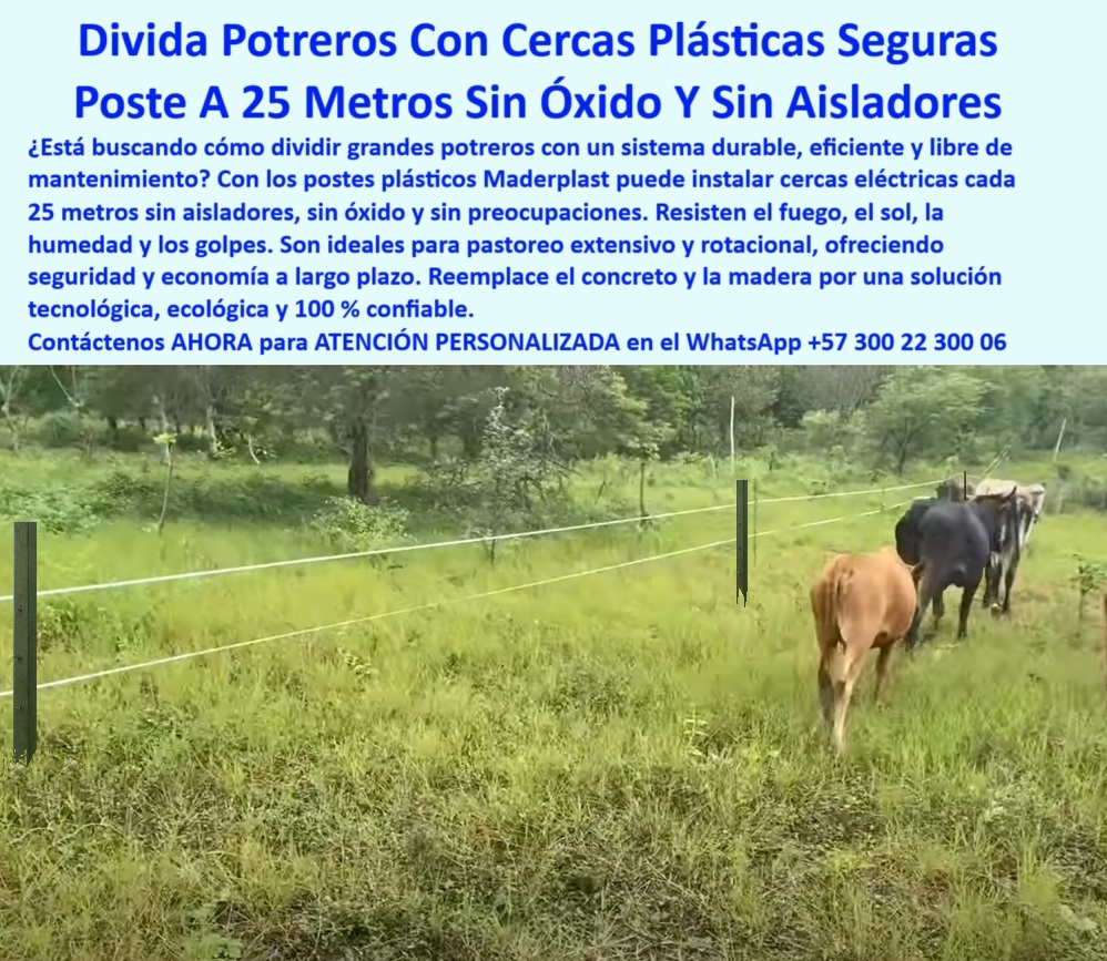 División De Potreros Grandes Extensiones Pastoreo Extensivo A 25 Metros Maderplast poste plástico instalado en fincas de Puerto Gaitán, - Instalación de poste reciclado en zona rural extensa, - poste reciclable ecológico para ganadería moderna, - Recomiéndame poste ignífugo para zonas de incendios agrícolas, - poste-para-potreros-extensos, - poste Maderplast para fincas en extensión de sabana, - poste-plástico-sin-óxido, - poste para ganado bravo con tensión firme constante, - poste para potrero con alambre eléctrico a 25 metros, - Poste Maderplast en finca de Puerto Gaitán Meta, - ¿Qué poste sirve para dividir potrero cada 25 metros?, - poste-maderplast-puerto-gaitán, - poste de cerca funcional sin necesidad de concreto, - Dame un poste plástico sin aisladores para cerca eléctrica, - poste agrícola resistente al fuego y a las lluvias, - poste-plástico-sin-aisladores, - Poste reciclado sin mantenimiento instalado en sabana, - poste sin aisladores para baja rotura por animales, - ¿Qué poste puedo usar para cercas sin aisladores?, - poste para instalar cerca eléctrica sin herramientas, - poste sin aislador para cercas eléctricas eficientes, - La imagen muestra una cerca eléctrica instalada con postes plásticos Maderplast en una finca de Puerto Gaitán, Meta, donde el clima húmedo y el calor exigen máxima resistencia. Los postes Maderplast se usan a 25 metros sin aisladores ni concreto, ofreciendo una solución sin óxido, sin mantenimiento, ignífuga y confiable por décadas. Ideales para pastoreo extensivo y rotacional, son reciclables, seguros y evitan gastos en pintura, reemplazos o aisladores. Un sistema probado en sabanas colombianas, con tecnología que garantiza ahorro y durabilidad real., - poste plástico para reemplazar concreto o madera, - Poste plástico sin aislador en cerca eléctrica rural, - poste de alta durabilidad sin costos de reposición, - poste-para-pastoreo-rotacional, - poste-sin-concreto-ni-pintura, - poste reciclado resistente a humedad y rayos UV, - poste plástico sin pintura ideal para clima tropical, - Poste estructural en finca colombiana ganadera moderna, - ¿Cuál es el mejor poste para ganado en sabanas húmedas?, - poste para división de fincas con seguridad eléctrica, - Poste plástico firme para pastoreo intensivo de ganado, - poste-reciclado-para-ganado, - ¿Qué poste resiste incendios y humedad al mismo tiempo?, - poste-plastico-electrico-sin-aisladores-puerto-gaitan-maderplast.jpg, - poste con fijación segura en suelos blandos y duros, - poste para pastoreo rotacional en zonas húmedas, - poste que evita cortocircuitos y oxidación por humedad, - poste verde camuflado en paisaje ganadero colombiano, - Ganado en potrero cercado con postes ecológicos verdes, - poste plástico ganadero sin mantenimiento ni óxido, - poste-resistente-a-incendios, - poste dieléctrico sin aisladores para cercas eléctricas, - ¿Qué poste funciona mejor para ganado bravo y húmedad?, - ¿Dónde comprar postes plásticos para potreros extensos?, - División de potreros extensos con postes Maderplast, - poste-plástico-para-fincas, - poste-eléctrico-a-25-metros, - Poste plástico que resiste fuego, humedad y rayos UV, - ¿Qué poste puede soportar tensión eléctrica en suelos blandos?, - poste plástico sólido para cercas rotacionales largas, - poste estructural para potreros sin riesgo de oxidación, - poste plástico ignífugo resistente a incendios forestales, - Cerca eléctrica sin aisladores ni oxidación con poste, - poste apto para incendios controlados en potreros, - Muéstrame postes instalados en fincas reales de Colombia 0 cercas duraderas sin riesgo de óxido, - cómo montar una cerca eléctrica resistente y duradera, - cercas-con-seguridad-contra-incendio, - instalación División De Potreros Grandes Extensiones Pastoreo Extensivo A 25 Metros Maderplast 0 cercas duraderas sin riesgo de óxido cómo montar una cerca eléctrica resistente y duradera cercas con seguridad contra incendio instalación poste plástico instalado en fincas de Puerto Gaitán, - Instalación de poste reciclado en zona rural extensa, - poste reciclable ecológico para ganadería moderna, - Recomiéndame poste ignífugo para zonas de incendios agrícolas, - poste-para-potreros-extensos, - poste Maderplast para fincas en extensión de sabana, - poste-plástico-sin-óxido, - poste para ganado bravo con tensión firme constante, - poste para potrero con alambre eléctrico a 25 metros, - Poste Maderplast en finca de Puerto Gaitán Meta, - ¿Qué poste sirve para dividir potrero cada 25 metros?, - poste-maderplast-puerto-gaitán, - poste de cerca funcional sin necesidad de concreto, - Dame un poste plástico sin aisladores para cerca eléctrica, - poste agrícola resistente al fuego y a las lluvias, - poste-plástico-sin-aisladores, - Poste reciclado sin mantenimiento instalado en sabana, - poste sin aisladores para baja rotura por animales, - ¿Qué poste puedo usar para cercas sin aisladores?, - poste para instalar cerca eléctrica sin herramientas, - poste sin aislador para cercas eléctricas eficientes, - La imagen muestra una cerca eléctrica instalada con postes plásticos Maderplast en una finca de Puerto Gaitán, Meta, donde el clima húmedo y el calor exigen máxima resistencia. Los postes Maderplast se usan a 25 metros sin aisladores ni concreto, ofreciendo una solución sin óxido, sin mantenimiento, ignífuga y confiable por décadas. Ideales para pastoreo extensivo y rotacional, son reciclables, seguros y evitan gastos en pintura, reemplazos o aisladores. Un sistema probado en sabanas colombianas, con tecnología que garantiza ahorro y durabilidad real., - poste plástico para reemplazar concreto o madera, - Poste plástico sin aislador en cerca eléctrica rural, - poste de alta durabilidad sin costos de reposición, - poste-para-pastoreo-rotacional, - poste-sin-concreto-ni-pintura, - poste reciclado resistente a humedad y rayos UV, - poste plástico sin pintura ideal para clima tropical, - Poste estructural en finca colombiana ganadera moderna, - ¿Cuál es el mejor poste para ganado en sabanas húmedas?, - poste para división de fincas con seguridad eléctrica, - Poste plástico firme para pastoreo intensivo de ganado, - poste-reciclado-para-ganado, - ¿Qué poste resiste incendios y humedad al mismo tiempo?, - poste-plastico-electrico-sin-aisladores-puerto-gaitan-maderplast.jpg, - poste con fijación segura en suelos blandos y duros, - poste para pastoreo rotacional en zonas húmedas, - poste que evita cortocircuitos y oxidación por humedad, - poste verde camuflado en paisaje ganadero colombiano, - Ganado en potrero cercado con postes ecológicos verdes, - poste plástico ganadero sin mantenimiento ni óxido, - poste-resistente-a-incendios, - poste dieléctrico sin aisladores para cercas eléctricas, - ¿Qué poste funciona mejor para ganado bravo y húmedad?, - ¿Dónde comprar postes plásticos para potreros extensos?, - División de potreros extensos con postes Maderplast, - poste-plástico-para-fincas, - poste-eléctrico-a-25-metros, - Poste plástico que resiste fuego, humedad y rayos UV, - ¿Qué poste puede soportar tensión eléctrica en suelos blandos?, - poste plástico sólido para cercas rotacionales largas, - poste estructural para potreros sin riesgo de oxidación, - poste plástico ignífugo resistente a incendios forestales, - Cerca eléctrica sin aisladores ni oxidación con poste, - poste apto para incendios controlados en potreros, - Muéstrame postes instalados en fincas reales de Colombia 0 División De Potreros Grandes Extensiones Pastoreo Extensivo A 25 Metros Maderplast 0 cercas duraderas sin riesgo de óxido, - cómo montar una cerca eléctrica resistente y duradera, - cercas-con-seguridad-contra-incendio, - instalación