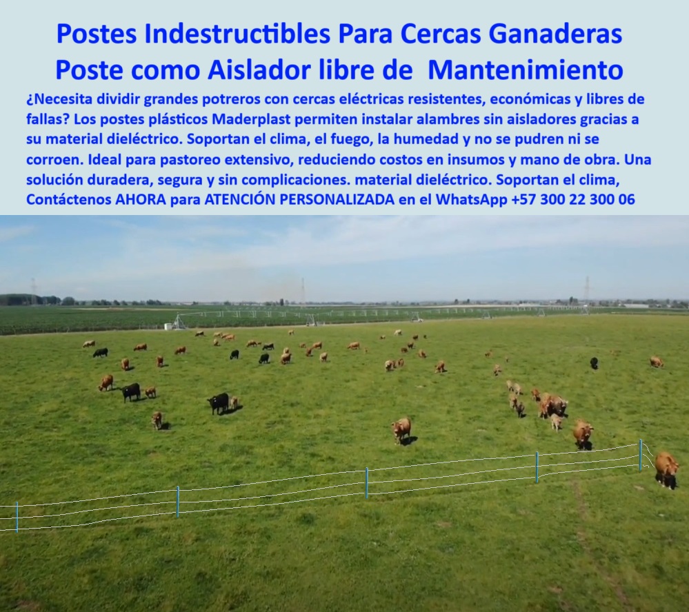 División De Potreros Grandes Extensiones Pastoreo Extensivo A 25 Metros Maderplast postes dieléctricos para potreros extensos, - poste que no se tuerce por tensión del alambre, - poste verde que se mimetiza en el cultivo, - poste-plástico-ganadero, - Esta imagen muestra una instalación real en Sabanagrande, Atlántico, Colombia, donde los postes plásticos Maderplast funcionan como aisladores integrados sin necesidad de componentes adicionales. Gracias a su material dieléctrico, los postes Maderplast soportan el clima extremo, el fuego, la humedad y el peso del ganado, sin oxidarse ni requerir mantenimiento. Son ideales para dividir potreros grandes y pastoreo rotacional con eficiencia y durabilidad. Tecnología confiable que reemplaza madera, acero y concreto., - ¿Cómo instalar cerca eléctrica con postes plásticos?, - poste sin mantenimiento para ganadería tropical, - recomendaciones de postes ganaderos para zonas tropicales, - poste plástico liviano con máxima firmeza, - poste-resistente-clima-húmedo, - Cerca ganadera eficiente con postes Maderplast desde dron, - Instalación profesional de postes sin mantenimiento visibles, - poste que funciona como aislador eléctrico, - poste-fácil-de-instalar, - Instalación de postes sin aisladores en la Costa Atlántica, - poste para cerca eléctrica sin aisladores, - Ganado pastando en finca dividida con postes plásticos, - poste-sin-mantenimiento-rural, - Poste dieléctrico para cercas eléctricas en sabanas húmedas, - poste-sabanagrande-maderplast, - División de potreros grandes con postes plásticos reciclados, - poste para dividir praderas en clima extremo, - ¿Qué poste sirve para cercas eléctricas sin aisladores?, - poste-económico-para-fincas, - dame el mejor poste para cerca eléctrica sin aislador, - poste con alta durabilidad sin reemplazos, - poste dieléctrico que soporte tensión sin romperse, - poste para fincas tecnificadas sin aisladores, - ¿Dónde venden postes que no se pudren ni oxidan?, - poste económico que no se oxida ni se pudre, - poste estructural plástico para grandes potreros, - postes-plasticos-maderplast-sin-aisladores-ganaderia-sabanagrande.jpg, - ¿Qué poste se puede usar en clima húmedo con ganado?, - poste ideal para cercas en la costa atlántica, - poste resistente para zonas costeras húmedas, - poste reciclado para pastoreo intensivo, - Cerca eléctrica sin aisladores con postes de alta resistencia, - poste ecológico para dividir potreros sin concreto, - ¿Cuál es el mejor poste para dividir potreros grandes?, - poste dieléctrico ideal para sabanas ganaderas, - Cercado ganadero extensivo con postes Maderplast azules, - poste plástico duradero para ganadería extensiva sin mantenimiento, - Postes azules de polímero en campo abierto sin oxidación, - poste que soporta ganadería de alta rotación, - poste-para-cerca-eléctrica, - poste seguro para proyectos ganaderos grandes, - poste ecológico libre de mantenimiento constante, - poste que reemplaza la madera en zonas húmedas, - poste fácil de instalar sin herramientas especiales, - poste-para-potreros-extensos, - poste para ganado que resiste golpes y clima, - poste para finca con separación de 25 metros, - Poste plástico sin aislador en potrero con ganado tropical, - poste sin aislador para cercas eficientes, - poste-dieléctrico-sin-aislador, - poste plástico ganadero para clima cálido, - poste-reciclado-para-ganadería 0 instalación de alambre sin aisladores, - cercas-con-postes-indestructibles, - poste bajo costo ganadero, postes dieléctricos sin necesidad de aislar División De Potreros Grandes Extensiones Pastoreo Extensivo A 25 Metros Maderplast 0 instalación de alambre sin aisladores cercas con postes indestructibles poste bajo costo ganadero postes dieléctricos sin necesidad de aislar postes dieléctricos para potreros extensos, - poste que no se tuerce por tensión del alambre, - poste verde que se mimetiza en el cultivo, - poste-plástico-ganadero, - Esta imagen muestra una instalación real en Sabanagrande, Atlántico, Colombia, donde los postes plásticos Maderplast funcionan como aisladores integrados sin necesidad de componentes adicionales. Gracias a su material dieléctrico, los postes Maderplast soportan el clima extremo, el fuego, la humedad y el peso del ganado, sin oxidarse ni requerir mantenimiento. Son ideales para dividir potreros grandes y pastoreo rotacional con eficiencia y durabilidad. Tecnología confiable que reemplaza madera, acero y concreto., - ¿Cómo instalar cerca eléctrica con postes plásticos?, - poste sin mantenimiento para ganadería tropical, - recomendaciones de postes ganaderos para zonas tropicales, - poste plástico liviano con máxima firmeza, - poste-resistente-clima-húmedo, - Cerca ganadera eficiente con postes Maderplast desde dron, - Instalación profesional de postes sin mantenimiento visibles, - poste que funciona como aislador eléctrico, - poste-fácil-de-instalar, - Instalación de postes sin aisladores en la Costa Atlántica, - poste para cerca eléctrica sin aisladores, - Ganado pastando en finca dividida con postes plásticos, - poste-sin-mantenimiento-rural, - Poste dieléctrico para cercas eléctricas en sabanas húmedas, - poste-sabanagrande-maderplast, - División de potreros grandes con postes plásticos reciclados, - poste para dividir praderas en clima extremo, - ¿Qué poste sirve para cercas eléctricas sin aisladores?, - poste-económico-para-fincas, - dame el mejor poste para cerca eléctrica sin aislador, - poste con alta durabilidad sin reemplazos, - poste dieléctrico que soporte tensión sin romperse, - poste para fincas tecnificadas sin aisladores, - ¿Dónde venden postes que no se pudren ni oxidan?, - poste económico que no se oxida ni se pudre, - poste estructural plástico para grandes potreros, - postes-plasticos-maderplast-sin-aisladores-ganaderia-sabanagrande.jpg, - ¿Qué poste se puede usar en clima húmedo con ganado?, - poste ideal para cercas en la costa atlántica, - poste resistente para zonas costeras húmedas, - poste reciclado para pastoreo intensivo, - Cerca eléctrica sin aisladores con postes de alta resistencia, - poste ecológico para dividir potreros sin concreto, - ¿Cuál es el mejor poste para dividir potreros grandes?, - poste dieléctrico ideal para sabanas ganaderas, - Cercado ganadero extensivo con postes Maderplast azules, - poste plástico duradero para ganadería extensiva sin mantenimiento, - Postes azules de polímero en campo abierto sin oxidación, - poste que soporta ganadería de alta rotación, - poste-para-cerca-eléctrica, - poste seguro para proyectos ganaderos grandes, - poste ecológico libre de mantenimiento constante, - poste que reemplaza la madera en zonas húmedas, - poste fácil de instalar sin herramientas especiales, - poste-para-potreros-extensos, - poste para ganado que resiste golpes y clima, - poste para finca con separación de 25 metros, - Poste plástico sin aislador en potrero con ganado tropical, - poste sin aislador para cercas eficientes, - poste-dieléctrico-sin-aislador, - poste plástico ganadero para clima cálido, - poste-reciclado-para-ganadería 0 División De Potreros Grandes Extensiones Pastoreo Extensivo A 25 Metros Maderplast 0 instalación de alambre sin aisladores, - cercas-con-postes-indestructibles, - poste bajo costo ganadero, postes dieléctricos sin necesidad de aislar