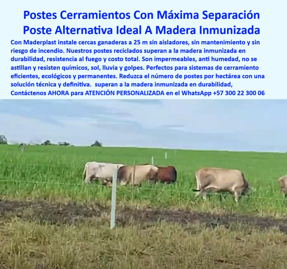 División De Potreros Grandes Extensiones Pastoreo Extensivo A 25 Metros Maderplast Mejores postes para finca sostenible tropical, - postes-reciclados-para-ganadería, - Poste plástico firme para pastoreo extensivo, - Poste plástico sin aislador instalado a 25 metros, - Cerca ganadera ecológica en Puerto Gaitán Meta, - Cómo instalar cerca sin concreto ni aisladores, - poste resistente a fuego humedad y termitas, - Instalación sencilla sin herramientas en campo, - poste alternativo a la madera inmunizada ganadería, - sistema de cerramiento sin aisladores cada 25 metros, - postes reciclados para cercas sin mantenimiento, - cerca económica con postes de larga duración, - poste-liviano-y-resistente, - Poste de larga duración para ganadería extensiva, - Alternativas ecológicas a la madera inmunizada en cercas, - ganadería-sostenible-en-colombia, - sistema-de-cerramiento-rural, - alternativa-a-la-madera-inmunizada, - Alternativa a madera inmunizada instalada en finca real, - poste-plastico-sin-aislador-25-metros-fazenda-puerto-gaitan.jpg, - poste plástico para suelos húmedos o fangosos, - ¿Hay postes que aguanten humedad y fuego?, - poste dieléctrico para cerco sin aisladores, - poste-anti-fuego-para-cerca, - solución ganadera sostenible sin madera ni concreto, - cerca para ganado con postes plásticos impermeables, - ¿Postes ganaderos que duren toda la vida?, - ¿Qué poste puedo usar en vez de madera inmunizada?, - Cerramiento eficiente sin madera ni concreto, - Desde la Finca La Fazenda en Puerto Gaitán, Meta, Colombia, este sistema de cerramiento demuestra cómo los postes plásticos dieléctricos superan a la madera inmunizada. Resistentes al fuego, humedad y químicos, se instalan a 25 metros sin aisladores, sin romperse ni oxidarse. Esta es la solución definitiva y sostenible para ganaderos tecnificados que buscan reducir costos y maximizar eficiencia., - postes plásticos para reemplazo de madera inmunizada, - poste para reducir costos en mantenimiento rural, - Cerramiento con poste reciclado duradero y ecológico, - Cerco firme visible con distancias largas entre postes, - ¿Cuál es el mejor poste para cercas sin mantenimiento?, - cerramientos ecológicos sin tratamientos químicos, - poste-plástico-para-potreros, - Poste sin mantenimiento en sabana colombiana, - cerramiento eficiente para grandes extensiones rurales, - cercas duraderas en clima cálido húmedo, - ¿Cómo cercar a 25 metros sin aisladores?, - poste seguro para zonas de alto riesgo de incendio, - cerramientos-para-grandes-extensiones, - cerca para finca tecnificada en sabana tropical, - postes para ganadería extensiva sin reposición, - cercas-sin-mantenimiento-extensivo, - Poste resistente a clima extremo y animales, - cercas para finca sin mantenimiento por décadas, - postes reciclables con alta resistencia estructural, - instalación de postes sin herramientas especiales, - cercado-a-25-metros-entre-postes, - Ganado contenido con postes resistentes al fuego, - cómo instalar cerca a 25 metros entre postes, - postes que no se parten ni necesitan pintura, - cómo dividir potrero con pocos postes, - poste ligero que soporta tensión de alambre, - postes ganaderos que no se astillan ni oxidan 0 postes cerramientos con máxima separación, Cuál es la mejor alternativa a la madera inmunizada, postes sistemas de cerramiento anti combustión fuego División De Potreros Grandes Extensiones Pastoreo Extensivo A 25 Metros Maderplast 0 postes cerramientos con máxima separación Cuál es la mejor alternativa a la madera inmunizada postes sistemas de cerramiento anti combustión fuego Mejores postes para finca sostenible tropical, - postes-reciclados-para-ganadería, - Poste plástico firme para pastoreo extensivo, - Poste plástico sin aislador instalado a 25 metros, - Cerca ganadera ecológica en Puerto Gaitán Meta, - Cómo instalar cerca sin concreto ni aisladores, - poste resistente a fuego humedad y termitas, - Instalación sencilla sin herramientas en campo, - poste alternativo a la madera inmunizada ganadería, - sistema de cerramiento sin aisladores cada 25 metros, - postes reciclados para cercas sin mantenimiento, - cerca económica con postes de larga duración, - poste-liviano-y-resistente, - Poste de larga duración para ganadería extensiva, - Alternativas ecológicas a la madera inmunizada en cercas, - ganadería-sostenible-en-colombia, - sistema-de-cerramiento-rural, - alternativa-a-la-madera-inmunizada, - Alternativa a madera inmunizada instalada en finca real, - poste-plastico-sin-aislador-25-metros-fazenda-puerto-gaitan.jpg, - poste plástico para suelos húmedos o fangosos, - ¿Hay postes que aguanten humedad y fuego?, - poste dieléctrico para cerco sin aisladores, - poste-anti-fuego-para-cerca, - solución ganadera sostenible sin madera ni concreto, - cerca para ganado con postes plásticos impermeables, - ¿Postes ganaderos que duren toda la vida?, - ¿Qué poste puedo usar en vez de madera inmunizada?, - Cerramiento eficiente sin madera ni concreto, - Desde la Finca La Fazenda en Puerto Gaitán, Meta, Colombia, este sistema de cerramiento demuestra cómo los postes plásticos dieléctricos superan a la madera inmunizada. Resistentes al fuego, humedad y químicos, se instalan a 25 metros sin aisladores, sin romperse ni oxidarse. Esta es la solución definitiva y sostenible para ganaderos tecnificados que buscan reducir costos y maximizar eficiencia., - postes plásticos para reemplazo de madera inmunizada, - poste para reducir costos en mantenimiento rural, - Cerramiento con poste reciclado duradero y ecológico, - Cerco firme visible con distancias largas entre postes, - ¿Cuál es el mejor poste para cercas sin mantenimiento?, - cerramientos ecológicos sin tratamientos químicos, - poste-plástico-para-potreros, - Poste sin mantenimiento en sabana colombiana, - cerramiento eficiente para grandes extensiones rurales, - cercas duraderas en clima cálido húmedo, - ¿Cómo cercar a 25 metros sin aisladores?, - poste seguro para zonas de alto riesgo de incendio, - cerramientos-para-grandes-extensiones, - cerca para finca tecnificada en sabana tropical, - postes para ganadería extensiva sin reposición, - cercas-sin-mantenimiento-extensivo, - Poste resistente a clima extremo y animales, - cercas para finca sin mantenimiento por décadas, - postes reciclables con alta resistencia estructural, - instalación de postes sin herramientas especiales, - cercado-a-25-metros-entre-postes, - Ganado contenido con postes resistentes al fuego, - cómo instalar cerca a 25 metros entre postes, - postes que no se parten ni necesitan pintura, - cómo dividir potrero con pocos postes, - poste ligero que soporta tensión de alambre, - postes ganaderos que no se astillan ni oxidan 0 División De Potreros Grandes Extensiones Pastoreo Extensivo A 25 Metros Maderplast 0 postes cerramientos con máxima separación, Cuál es la mejor alternativa a la madera inmunizada, postes sistemas de cerramiento anti combustión fuego