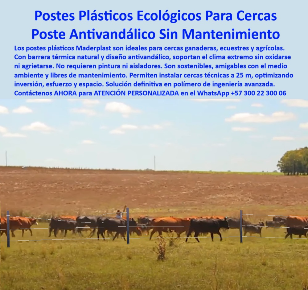 División De Potreros Grandes Extensiones Pastoreo Extensivo A 25 Metros Maderplast poste ecológico sin mantenimiento para ganadería, - poste sin químicos para cerca sostenible, - poste ideal para ganado extensivo y rotacional, - poste-para-zonas-áridas, - poste reciclado para dividir ganado con eficiencia, - Postes plásticos alineados a gran distancia sin fallas, - poste-ecológico-para-clima-seco, - Cercado plástico sin aisladores ni pintura visible, - poste para cercas técnicas a 25 metros, - Postes plásticos para clima cálido y ganado en línea, - ¿Qué poste no se oxida ni necesita pintura?, - poste para potrero en clima cálido sin pintura, - ¿Dónde comprar postes ecológicos antivandálicos?, - poste ecológico sin riesgo de incendio, - ¿Qué cerca no se rompe ni se pudre con el tiempo?, - cerca técnica con postes plásticos antivandálicos, - poste para divisiones ganaderas de bajo costo, - poste para cercas sin pintura ni aisladores, - poste-liviano-pero-resistente, - Cerca ecológica con postes de barrera térmica natural, - poste plástico ecológico para clima extremo, - soluciones de cerramiento para clima seco extremo, - poste para finca ganadera en Girardot, - postes para dividir ganado con mínimo reemplazo, - poste-de-polímero-para-potreros, - Infraestructura ganadera limpia sin madera ni metal, - poste que no se oxida ni se parte, - poste de ingeniería para clima seco y sol, - ¿Qué poste es ideal para clima cálido y ganado?, - poste sin grietas para zonas ecuestres, - poste de polímero sólido para campo abierto, - poste plástico con resistencia térmica comprobada, - División de ganado sin inclinación en suelo plano, - La imagen muestra una cerca ganadera impecablemente alineada en la ganadería Rocha Hermanos en Girardot, Cundinamarca, donde los postes plásticos Maderplast fueron instalados en distancias de hasta 25 metros, sin aisladores, sin pintura y sin refuerzos intermedios. A plena luz solar y sobre terreno árido, estos postes demuestran su capacidad de resistir las condiciones más exigentes: radiación UV, golpes de ganado, humedad residual y cambios térmicos extremos. Su diseño antivandálico y su barrera térmica natural hacen de este producto una solución definitiva para fincas ganaderas, ecuestres y agrícolas que buscan eficiencia, sostenibilidad y reducción real de costos a largo plazo. Los postes Maderplast no se oxidan, no se agrietan, no se parten, no propaga fuego y no requieren mantenimiento. Con más de 150 fincas en Colombia como testimonio, Maderplast se consolida como la marca líder en innovación para cercas técnicas, siendo preferida por ganaderos que buscan productos duraderos, ecológicos y funcionales que les permitan optimizar sus hectáreas sin volver a gastar en postes nunca más., - poste durable en campo abierto sin aislador, - poste reciclado con barrera térmica ganadera, - poste-para-cercas-de-25-metros, - poste antivandálico para potreros rurales, - Sistema de cerca con postes ecológicos resistentes, - poste-para-pastoreo-extensivo, - poste sin partes metálicas para larga duración, - poste resistente al fuego y al sol para potrero, - ¿Cómo dividir potreros a 25 metros sin aislador?, - poste-plástico-de-larga-duración, - poste-ecologico-antivandalico-para-ganado-girardot.jpg, - poste para dividir pasto sin mantenimiento, - poste para ganadería tecnificada sin oxido, - poste plástico anti impacto y alta flexibilidad, - poste para manejo de ganado sin reemplazo, - poste con barrera térmica natural y larga vida útil, - poste-para-cercas-ganaderas, - Ganado detrás de cerca técnica con postes reciclados, - Postes erguidos sin refuerzo en potrero de Girardot, - poste técnico sin pudrición para ganado vacuno, - poste-reciclado-antivandálico, - Postes antivandálicos firmes en terreno abierto seco, - poste-plástico-para-ganado 0 postes plásticos con barrera térmica natural, - poste ecológico antivandálico, - estacones plásticos para cercas ecuestres, - postes de polímero para División De Potreros Grandes Extensiones Pastoreo Extensivo A 25 Metros Maderplast 0 postes plásticos con barrera térmica natural poste ecológico antivandálico estacones plásticos para cercas ecuestres postes de polímero para poste ecológico sin mantenimiento para ganadería, - poste sin químicos para cerca sostenible, - poste ideal para ganado extensivo y rotacional, - poste-para-zonas-áridas, - poste reciclado para dividir ganado con eficiencia, - Postes plásticos alineados a gran distancia sin fallas, - poste-ecológico-para-clima-seco, - Cercado plástico sin aisladores ni pintura visible, - poste para cercas técnicas a 25 metros, - Postes plásticos para clima cálido y ganado en línea, - ¿Qué poste no se oxida ni necesita pintura?, - poste para potrero en clima cálido sin pintura, - ¿Dónde comprar postes ecológicos antivandálicos?, - poste ecológico sin riesgo de incendio, - ¿Qué cerca no se rompe ni se pudre con el tiempo?, - cerca técnica con postes plásticos antivandálicos, - poste para divisiones ganaderas de bajo costo, - poste para cercas sin pintura ni aisladores, - poste-liviano-pero-resistente, - Cerca ecológica con postes de barrera térmica natural, - poste plástico ecológico para clima extremo, - soluciones de cerramiento para clima seco extremo, - poste para finca ganadera en Girardot, - postes para dividir ganado con mínimo reemplazo, - poste-de-polímero-para-potreros, - Infraestructura ganadera limpia sin madera ni metal, - poste que no se oxida ni se parte, - poste de ingeniería para clima seco y sol, - ¿Qué poste es ideal para clima cálido y ganado?, - poste sin grietas para zonas ecuestres, - poste de polímero sólido para campo abierto, - poste plástico con resistencia térmica comprobada, - División de ganado sin inclinación en suelo plano, - La imagen muestra una cerca ganadera impecablemente alineada en la ganadería Rocha Hermanos en Girardot, Cundinamarca, donde los postes plásticos Maderplast fueron instalados en distancias de hasta 25 metros, sin aisladores, sin pintura y sin refuerzos intermedios. A plena luz solar y sobre terreno árido, estos postes demuestran su capacidad de resistir las condiciones más exigentes: radiación UV, golpes de ganado, humedad residual y cambios térmicos extremos. Su diseño antivandálico y su barrera térmica natural hacen de este producto una solución definitiva para fincas ganaderas, ecuestres y agrícolas que buscan eficiencia, sostenibilidad y reducción real de costos a largo plazo. Los postes Maderplast no se oxidan, no se agrietan, no se parten, no propaga fuego y no requieren mantenimiento. Con más de 150 fincas en Colombia como testimonio, Maderplast se consolida como la marca líder en innovación para cercas técnicas, siendo preferida por ganaderos que buscan productos duraderos, ecológicos y funcionales que les permitan optimizar sus hectáreas sin volver a gastar en postes nunca más., - poste durable en campo abierto sin aislador, - poste reciclado con barrera térmica ganadera, - poste-para-cercas-de-25-metros, - poste antivandálico para potreros rurales, - Sistema de cerca con postes ecológicos resistentes, - poste-para-pastoreo-extensivo, - poste sin partes metálicas para larga duración, - poste resistente al fuego y al sol para potrero, - ¿Cómo dividir potreros a 25 metros sin aislador?, - poste-plástico-de-larga-duración, - poste-ecologico-antivandalico-para-ganado-girardot.jpg, - poste para dividir pasto sin mantenimiento, - poste para ganadería tecnificada sin oxido, - poste plástico anti impacto y alta flexibilidad, - poste para manejo de ganado sin reemplazo, - poste con barrera térmica natural y larga vida útil, - poste-para-cercas-ganaderas, - Ganado detrás de cerca técnica con postes reciclados, - Postes erguidos sin refuerzo en potrero de Girardot, - poste técnico sin pudrición para ganado vacuno, - poste-reciclado-antivandálico, - Postes antivandálicos firmes en terreno abierto seco, - poste-plástico-para-ganado 0 División De Potreros Grandes Extensiones Pastoreo Extensivo A 25 Metros Maderplast 0 postes plásticos con barrera térmica natural, - poste ecológico antivandálico, - estacones plásticos para cercas ecuestres, - postes de polímero para