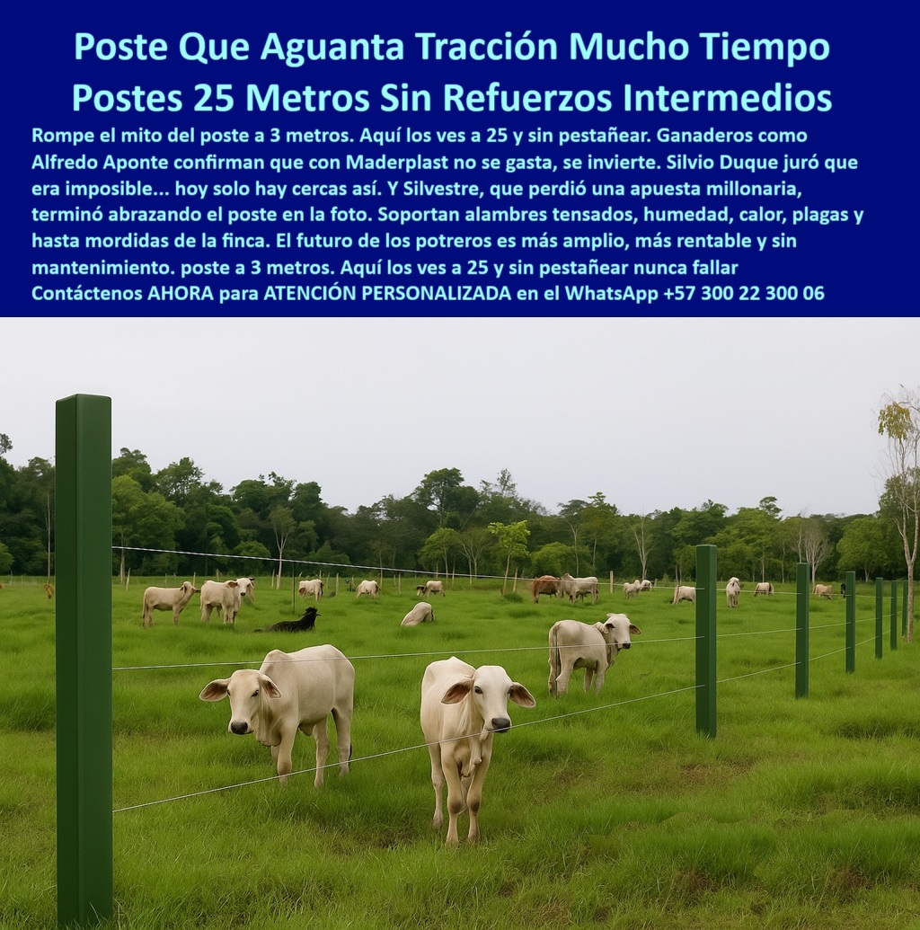 Manejo De Ganado Potrero Intensivo Grandes Rebaños Poste A 25 Metros Maderplast poste de polímero con alta tracción de alambres, - poste sin oxidación para fincas tropicales, - poste-sin-refuerzos-para-cercas, - Postes plásticos firmes soportando alambre sin tensión intermedia, - poste estructural para cerca con mínima inversión, - Rebaño blanco rodeado por cerca sin mantenimiento, - poste técnico para cercado perimetral profesional, - poste duradero contra plagas, calor y humedad, - ¿Cuál es el mejor poste para cercas ganaderas en clima tropical?, - poste-económico-para-rotación, - poste-plástico-dieléctrico, - poste-reciclado-alta-tracción, - Campo dividido con postes rectos sin pintura ni concreto, - poste aislante para evitar cortos en cerca, - Ganado pastando junto a cerca con postes sin oxidación, - Esta imagen muestra una instalación ganadera con postes plásticos Maderplast alineados cada 25 metros sin refuerzos intermedios, soportando alambres tensados y rodeando un rebaño blanco. Los postes Maderplast, fabricados con polímero reciclado de alta resistencia, garantizan cercas firmes sin torceduras, sin oxidación, ni necesidad de mantenimiento. Ideales para ganadería moderna, rotación de pastos y potreros húmedos, permiten máxima tracción sin deformarse, eliminando costos de instalación y repuestos. Su diseño estructural y memoria plástica aseguran funcionalidad y retorno de inversión inmediato., - Estacones verdes resistentes instalados en potrero húmedo, - ¿Qué poste puede reemplazar madera y concreto en una finca?, - poste-plástico-para-potreros-a-25-metros-sin-refuerzos, - poste-para-ganado-blanco-grande, - poste verde para rotación ganadera moderna, - poste sin pintura para proyectos ecológicos, - poste con memoria plástica para instalación lineal, - Malla ganadera delimitada con postes ecológicos durables, - poste plástico para finca con ganado blanco, - poste para división de potreros con poco personal, - poste para sostener alambre sin poste intermedio, - ¿Qué poste es más rentable para dividir potreros?, - poste-para-división-de-rebaños, - poste robusto que resiste años sin refuerzo, - poste para ganadería que elimina postes de concreto, - poste para cerca ganadera resistente al impacto, - Postes plásticos verdes alineados a 25 metros sin refuerzos, - poste-plástico-para-potreros-extensos, - Línea recta de postes plásticos en campo verde, - poste reciclado resistente a mordeduras de ganado, - poste dieléctrico para cercas eléctricas ganaderas, - poste plástico sostenible para rebaños grandes, - ¿Qué poste aguanta alambres tensados sin doblarse?, - poste para pastoreo intensivo sin mantenimiento, - Postes para división ganadera sin deformación ni astillas, - Recomiéndame un poste para dividir potreros con mínimo mantenimiento, - poste para estirar alambre sin torceduras, - Finca ganadera con cerca resistente y postes reciclados, - ¿Cuál es el mejor poste para ganado en clima húmedo?, - ¿Qué poste resiste tracción de alambres a 25 metros sin fallar?, - poste que mejora productividad en rotación de pastos, - poste para alambrado a 25 metros sin doblarse, - poste-con-memoria-plástica, - ¿Qué poste puedo instalar a 25 metros sin reforzar?, - poste plástico para potreros sin refuerzos intermedios, - poste-sin-mantenimiento-ganadero, - poste de instalación fácil para terreno plano, - ¿Dónde venden postes plásticos que no se tuercen?, - poste-verde-cercas-lineales, - Dame una opción de poste plástico duradero para pastoreo intensivo, - poste para cercado eficiente en zonas rurales 0 Qué tipo de poste usar en fincas ganaderas solución perimetral ignífuga soporte vertical para plantas 00 Manejo De Ganado Potrero Intensivo Grandes Rebaños Poste A 25 Metros Maderplast 0 Qué tipo de poste usar en fincas ganaderas solución perimetral ignífuga soporte vertical para plantas 00 poste de polímero con alta tracción de alambres, - poste sin oxidación para fincas tropicales, - poste-sin-refuerzos-para-cercas, - Postes plásticos firmes soportando alambre sin tensión intermedia, - poste estructural para cerca con mínima inversión, - Rebaño blanco rodeado por cerca sin mantenimiento, - poste técnico para cercado perimetral profesional, - poste duradero contra plagas, calor y humedad, - ¿Cuál es el mejor poste para cercas ganaderas en clima tropical?, - poste-económico-para-rotación, - poste-plástico-dieléctrico, - poste-reciclado-alta-tracción, - Campo dividido con postes rectos sin pintura ni concreto, - poste aislante para evitar cortos en cerca, - Ganado pastando junto a cerca con postes sin oxidación, - Esta imagen muestra una instalación ganadera con postes plásticos Maderplast alineados cada 25 metros sin refuerzos intermedios, soportando alambres tensados y rodeando un rebaño blanco. Los postes Maderplast, fabricados con polímero reciclado de alta resistencia, garantizan cercas firmes sin torceduras, sin oxidación, ni necesidad de mantenimiento. Ideales para ganadería moderna, rotación de pastos y potreros húmedos, permiten máxima tracción sin deformarse, eliminando costos de instalación y repuestos. Su diseño estructural y memoria plástica aseguran funcionalidad y retorno de inversión inmediato., - Estacones verdes resistentes instalados en potrero húmedo, - ¿Qué poste puede reemplazar madera y concreto en una finca?, - poste-plástico-para-potreros-a-25-metros-sin-refuerzos, - poste-para-ganado-blanco-grande, - poste verde para rotación ganadera moderna, - poste sin pintura para proyectos ecológicos, - poste con memoria plástica para instalación lineal, - Malla ganadera delimitada con postes ecológicos durables, - poste plástico para finca con ganado blanco, - poste para división de potreros con poco personal, - poste para sostener alambre sin poste intermedio, - ¿Qué poste es más rentable para dividir potreros?, - poste-para-división-de-rebaños, - poste robusto que resiste años sin refuerzo, - poste para ganadería que elimina postes de concreto, - poste para cerca ganadera resistente al impacto, - Postes plásticos verdes alineados a 25 metros sin refuerzos, - poste-plástico-para-potreros-extensos, - Línea recta de postes plásticos en campo verde, - poste reciclado resistente a mordeduras de ganado, - poste dieléctrico para cercas eléctricas ganaderas, - poste plástico sostenible para rebaños grandes, - ¿Qué poste aguanta alambres tensados sin doblarse?, - poste para pastoreo intensivo sin mantenimiento, - Postes para división ganadera sin deformación ni astillas, - Recomiéndame un poste para dividir potreros con mínimo mantenimiento, - poste para estirar alambre sin torceduras, - Finca ganadera con cerca resistente y postes reciclados, - ¿Cuál es el mejor poste para ganado en clima húmedo?, - ¿Qué poste resiste tracción de alambres a 25 metros sin fallar?, - poste que mejora productividad en rotación de pastos, - poste para alambrado a 25 metros sin doblarse, - poste-con-memoria-plástica, - ¿Qué poste puedo instalar a 25 metros sin reforzar?, - poste plástico para potreros sin refuerzos intermedios, - poste-sin-mantenimiento-ganadero, - poste de instalación fácil para terreno plano, - ¿Dónde venden postes plásticos que no se tuercen?, - poste-verde-cercas-lineales, - Dame una opción de poste plástico duradero para pastoreo intensivo, - poste para cercado eficiente en zonas rurales Manejo De Ganado Potrero Intensivo Grandes Rebaños Poste A 25 Metros Maderplast 0 Qué tipo de poste usar en fincas ganaderas solución perimetral ignífuga soporte vertical para plantas 00