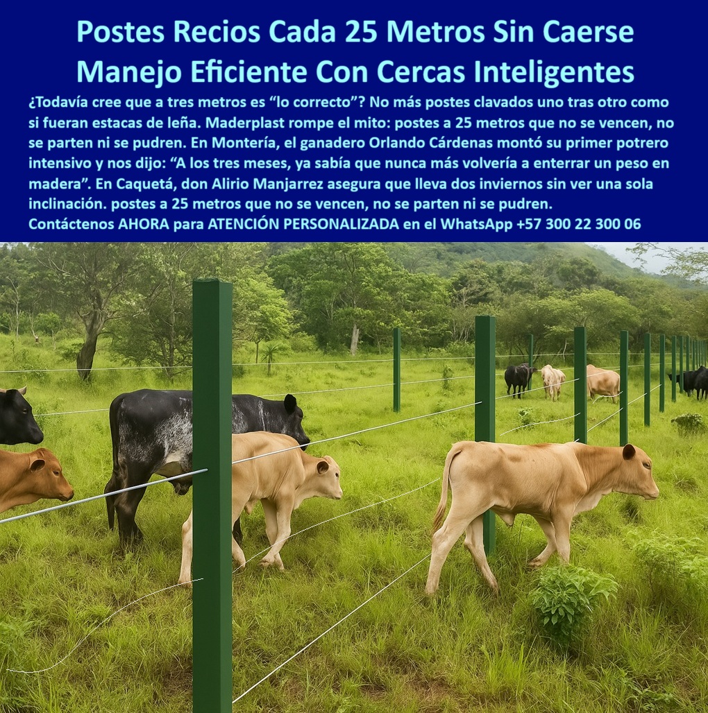 Manejo De Ganado Potrero Intensivo Grandes Rebaños Poste A 25 Metros Maderplast 0 guía visual para colocar postes de púas, - viga decorativa para exteriores, - postes sólidos de polímero reciclado para cercas, - poste-plástico fuertes Manejo De Ganado Potrero Intensivo Grandes Rebaños Poste A 25 Metros Maderplast 0 guía visual para colocar postes de púas viga decorativa para exteriores postes sólidos de polímero reciclado para cercas poste plástico fuertes poste reciclado para potrero tecnificado, - poste plástico para dividir grandes rebaños, - poste para pastoreo rotacional sin mantenimiento, - Postes reciclados en línea recta para manejo intensivo, - La imagen muestra una cerca ganadera construida con postes plásticos Maderplast perfectamente alineados a 25 metros de separación. Estos postes Maderplast están diseñados para soportar el paso del ganado, el clima extremo y los impactos sin vencerse, romperse ni oxidarse. Son la elección ideal para potreros intensivos, rotación de pasturas y proyectos rurales sostenibles, ofreciendo máxima eficiencia y cero mantenimiento. Resistentes al agua, al sol y a la presión del ganado, estos postes superan ampliamente a los de madera o concreto, siendo una solución duradera, ecológica y rentable., - poste-resistente-al-impacto-animal, - poste dieléctrico para seguridad animal, - ¿Cuál es el mejor poste para rotación de potreros?, - poste flexible que vuelve a su forma, - poste-firme-para-rebaños-grandes, - Recomiéndame un poste plástico que no se doble ni se oxide, - poste para rotación intensiva en fincas, - ¿Qué poste para ganado no se cae ni se vence con el tiempo?, - ¿Qué poste puedo usar en cercas técnicas de largo alcance?, - ¿Qué tipo de poste no necesita mantenimiento para vacas?, - poste rural para ganado en laderas, - poste estructural reciclado para cerca eléctrica, - poste plástico anti humedad para ganadería, - Postes plásticos alineados en potrero con ganado pastando, - poste sin concreto fácil de instalar, - poste resistente para zonas con lluvias intensas, - División de lotes ganaderos con postes sin oxidación, - poste-durable-para-pastoreo-rotacional, - poste-reciclado-para-cercas-ganaderas, - poste-ecológico-para-ganadería-tecnificada, - Opciones de postes reciclados fuertes para dividir fincas ganaderas, - poste-ganadero-para-terrenos-blandos, - Postes sin concreto sosteniendo alambre de púas tensado, - Ganado bovino delimitado por postes plásticos verdes rectos, - poste-plástico-a-25-metros, - poste plástico para alambre de púas, - poste liviano con alta resistencia estructural, - poste durable que no se cae ni se pudre, - poste de polímero para finca sin reposición, - Vacas pastando entre cercas con postes plásticos durables, - poste firme para cercas ganaderas extensas, - poste para ganado resistente a impacto y clima, - Potrero tecnificado cercado con postes firmes y ecológicos, - poste para manejo intensivo de ganado bravo, - poste plástico sin vencimiento para terrenos blandos, - ¿Postes ecológicos resistentes a lluvias para cercas ganaderas?, - poste-sin-concreto-para-cercado-rural, - poste de instalación amplia cada 25 metros, - ¿Dónde comprar postes plásticos para dividir potreros extensos?, - poste ecológico para división de potreros, - poste plástico fuerte para potreros intensivos, - Sistema de potrero con postes separados a 25 metros, - poste-plástico-para-potreros-intensivos, - poste para rebaños en terrenos inclinados, - Poste más duradero que la madera o concreto para potreros, - Delimitación rural ecológica con postes firmes sin pintura, - ¿Cuál es el mejor poste para ganadería intensiva a 25 metros?, - Cercado ganadero con postes de alta resistencia estructural, - poste-sin-mantenimiento-para-cercas, - poste para proyectos de división ganadera, - poste sin pintura para uso agropecuario, - poste-plastico-recio-para-ganado-en-potreros-extensivos.jpg 0 Manejo De Ganado Potrero Intensivo Grandes Rebaños Poste A 25 Metros Maderplast 0 guía visual para colocar postes de púas, - viga decorativa para exteriores, - postes sólidos de polímero reciclado para cercas, - poste-plástico fuertes