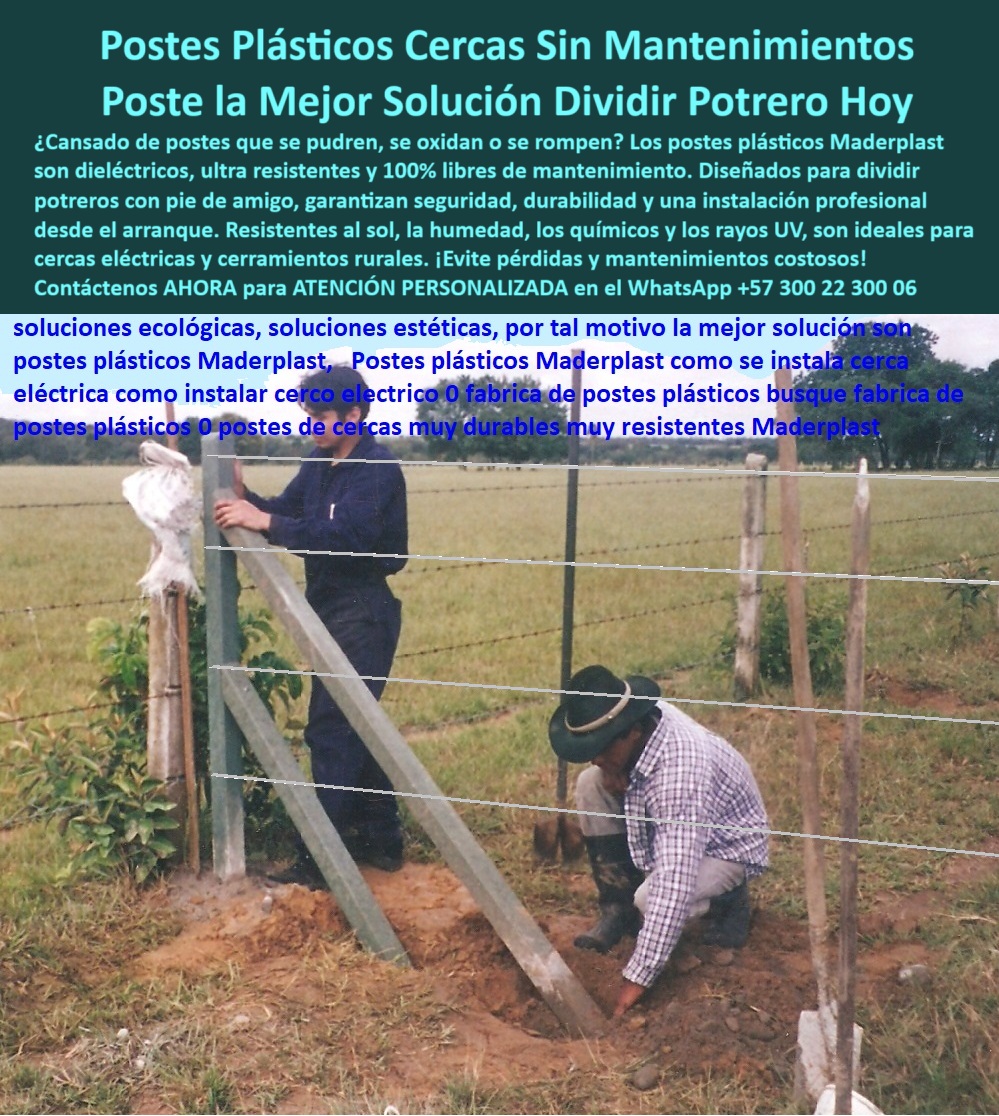 Paso A Paso Diseño Eficiente De Cercas Eléctricas Postes Dieléctricos Maderplast poste firme para alambres con instalación duradera, - Prueba real de poste en finca con pasto natural, - Esta imagen muestra la instalación real de un poste Maderplast con pie de amigo, tomada en la finca de los Caicedo, kilómetro 35 vía Puerto Gaitán, Meta. Los postes Maderplast permiten dividir potreros sin concreto, sin mantenimiento y sin oxidarse, incluso en suelos húmedos. Son ideales para cercas eléctricas seguras y ecológicas. Su resistencia comprobada al jalón, al clima y al tiempo los convierte en la inversión más rentable para el campo colombiano., - Poste dieléctrico reforzado soportando tensión sin grietas, - ¿Cómo instalar un poste para cerco con pie de amigo?, - poste sin aislador para cerca eléctrica de potrero, - ¿Qué poste aguanta jalones sin partirse?, - Campo agrícola cercado con postes ecológicos duraderos, - poste plástico dieléctrico que no se pudre, - ¿Dónde compro postes para potrero sin mantenimiento?, - poste para potrero que evita reemplazos costosos, - cerco-eléctrico-sin-óxido, - poste dieléctrico agrícola Maderplast finca Caicedo Meta, - poste que no se agrieta al recibir jalón, - pie-de-amigo-reforzado, - ¿Hay postes que no se oxiden ni se pudran?, - poste para cercas sin impacto ambiental negativo, - Estructura sólida en potrero con poste Maderplast, - poste-ecológico-para-ganadería, - poste para finca productiva con alta durabilidad, - poste-plástico-maderplast, - poste-dieléctrico-potrero, - finca-caicedo-puerto-gaitán, - Cerca ganadera profesional sin mantenimiento visible, - poste ganadero con ahorro en mano de obra, - Poste Maderplast recto instalado con alambre tenso, - poste estructural para cerco eléctrico sin oxidación, - Poste plástico con pie de amigo en finca de Meta Colombia, - poste-sin-concreto-ni-pintura, - poste-plastico-pie-de-amigo-meta-caicedo-maderplast.jpg, - poste plástico sólido para terrenos con humedad, - poste sólido sin taladro ni aisladores, - poste dieléctrico que no necesita pintura ni taladro, - poste que soporta tensión sin romperse ni doblarse, - Ganadero instalando poste sin taladro ni concreto, - poste para dividir potrero a 15 metros distancia, - poste plástico sin mantenimiento para potrero húmedo, - poste técnico con eficiencia probada por ganaderos, - poste agrícola instalado en finca en Puerto Gaitán, - instalación-poste-en-finca, - Postes plásticos sin oxidación instalados a 15 metros, - instalación de poste ganadero sin concreto, - ¿Qué poste usan en fincas en Puerto Gaitán?, - cerco-ganadero-sin-mantenimiento, - Pie de amigo anclado en terreno húmedo sin ceder, - poste plástico para finca con alambre de púas, - poste que aguanta jalones sin perder su forma, - poste de cerco con pie de amigo reforzado, - poste ecológico para ganadería en zonas agrícolas, - poste de 15 metros entre alambres para ganadería, - poste-para-división-de-potreros, - poste Maderplast instalado en finca Caicedo Meta, - poste plástico resistente a rayos UV y gorgojos, - poste económico sin mantenimiento para toda la vida, - poste seguro para uso intensivo con pie de amigo, - poste de arranque con pie de amigo reforzado, - poste sin mantenimiento para cercas eléctricas rurales 0 Poste plástico instalado a 15 metros en potrero agrícola, - cercas eléctricas sin impacto ambiental negativo, - sistema de cercas móviles, poste fuerte Paso A Paso Diseño Eficiente De Cercas Eléctricas Postes Dieléctricos Maderplast 0 Poste plástico instalado a 15 metros en potrero agrícola cercas eléctricas sin impacto ambiental negativo sistema de cercas móviles poste fuerte poste firme para alambres con instalación duradera, - Prueba real de poste en finca con pasto natural, - Esta imagen muestra la instalación real de un poste Maderplast con pie de amigo, tomada en la finca de los Caicedo, kilómetro 35 vía Puerto Gaitán, Meta. Los postes Maderplast permiten dividir potreros sin concreto, sin mantenimiento y sin oxidarse, incluso en suelos húmedos. Son ideales para cercas eléctricas seguras y ecológicas. Su resistencia comprobada al jalón, al clima y al tiempo los convierte en la inversión más rentable para el campo colombiano., - Poste dieléctrico reforzado soportando tensión sin grietas, - ¿Cómo instalar un poste para cerco con pie de amigo?, - poste sin aislador para cerca eléctrica de potrero, - ¿Qué poste aguanta jalones sin partirse?, - Campo agrícola cercado con postes ecológicos duraderos, - poste plástico dieléctrico que no se pudre, - ¿Dónde compro postes para potrero sin mantenimiento?, - poste para potrero que evita reemplazos costosos, - cerco-eléctrico-sin-óxido, - poste dieléctrico agrícola Maderplast finca Caicedo Meta, - poste que no se agrieta al recibir jalón, - pie-de-amigo-reforzado, - ¿Hay postes que no se oxiden ni se pudran?, - poste para cercas sin impacto ambiental negativo, - Estructura sólida en potrero con poste Maderplast, - poste-ecológico-para-ganadería, - poste para finca productiva con alta durabilidad, - poste-plástico-maderplast, - poste-dieléctrico-potrero, - finca-caicedo-puerto-gaitán, - Cerca ganadera profesional sin mantenimiento visible, - poste ganadero con ahorro en mano de obra, - Poste Maderplast recto instalado con alambre tenso, - poste estructural para cerco eléctrico sin oxidación, - Poste plástico con pie de amigo en finca de Meta Colombia, - poste-sin-concreto-ni-pintura, - poste-plastico-pie-de-amigo-meta-caicedo-maderplast.jpg, - poste plástico sólido para terrenos con humedad, - poste sólido sin taladro ni aisladores, - poste dieléctrico que no necesita pintura ni taladro, - poste que soporta tensión sin romperse ni doblarse, - Ganadero instalando poste sin taladro ni concreto, - poste para dividir potrero a 15 metros distancia, - poste plástico sin mantenimiento para potrero húmedo, - poste técnico con eficiencia probada por ganaderos, - poste agrícola instalado en finca en Puerto Gaitán, - instalación-poste-en-finca, - Postes plásticos sin oxidación instalados a 15 metros, - instalación de poste ganadero sin concreto, - ¿Qué poste usan en fincas en Puerto Gaitán?, - cerco-ganadero-sin-mantenimiento, - Pie de amigo anclado en terreno húmedo sin ceder, - poste plástico para finca con alambre de púas, - poste que aguanta jalones sin perder su forma, - poste de cerco con pie de amigo reforzado, - poste ecológico para ganadería en zonas agrícolas, - poste de 15 metros entre alambres para ganadería, - poste-para-división-de-potreros, - poste Maderplast instalado en finca Caicedo Meta, - poste plástico resistente a rayos UV y gorgojos, - poste económico sin mantenimiento para toda la vida, - poste seguro para uso intensivo con pie de amigo, - poste de arranque con pie de amigo reforzado, - poste sin mantenimiento para cercas eléctricas rurales 0 Paso A Paso Diseño Eficiente De Cercas Eléctricas Postes Dieléctricos Maderplast 0 Poste plástico instalado a 15 metros en potrero agrícola, - cercas eléctricas sin impacto ambiental negativo, - sistema de cercas móviles, poste fuerte