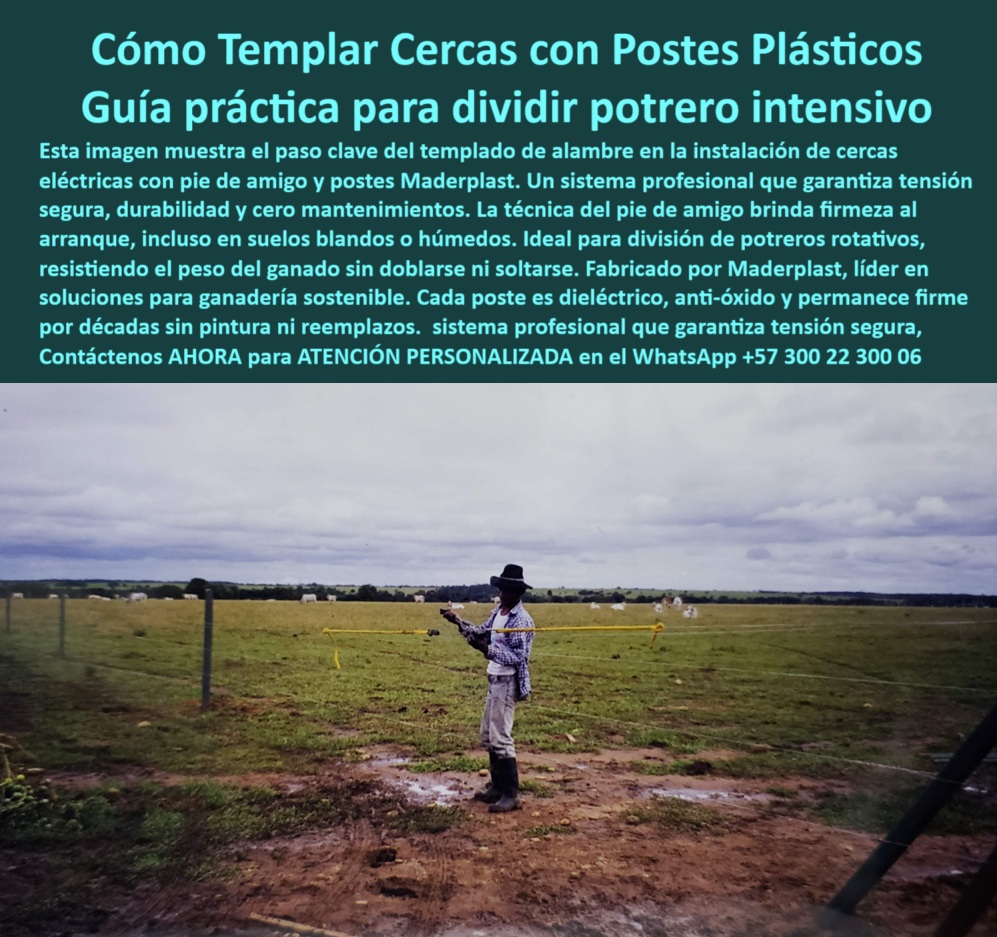 Paso A Paso Diseño Eficiente De Cercas Eléctricas Postes Dieléctricos Maderplast poste técnico que reduce repuestos en el campo, - Poste firme anclado con sistema de pie de amigo, - poste profesional para tensar cercas rurales, - ¿Cuál es el mejor poste para templar cercas con pie de amigo?, - poste-para-tensado-fuerte, - poste para templar cerca eléctrica de forma segura, - poste-reciclado-para-campo, - ¿Dónde comprar poste dieléctrico para zonas húmedas sin mantenimiento?, - poste-dieléctrico-de-templado, - poste ideal para proyectos de infraestructura rural, - Instalación de cercas técnicas con poste plástico robusto, - ¿Qué poste aguanta tensión y no se oxida en campo?, - poste-plástico-para-cercas-intensivas, - poste para potrero dividido con sistema técnico, - ¿Cómo templar alambre en una finca con postes plásticos?, - poste-sin-mantenimiento-para-potreros, - Campo abierto con postes técnicos instalados en húmedo, - poste verde técnico para potrero rotacional, - Buscar poste resistente al impacto para división rotacional de potrero, - ¿Qué poste es ideal para dividir potrero intensivo?, - poste-para-suelos-húmedos, - poste-para-cercas-electrificadas, - Línea de cercado profesional con poste dieléctrico verde, - poste sin agrietarse con peso de ganado, - poste sólido para ganadería sostenible y rentable, - Poste plástico para terrenos húmedos sin pintura ni concreto, - poste de cercado sin pintura ni brocas especiales, - poste innovador para cercas perimetrales productivas, - poste-para-división-con-pie-de-amigo, - poste dieléctrico que no se oxida ni se parte, - poste-para-sistemas-ganaderos, - poste dieléctrico para tensado de alambre en finca, - ¿Qué poste usar para arrancar una cerca con pie de amigo?, - poste que garantiza tensión perfecta en cercado, - poste con instalación rápida y sin errores, - Imagen de poste con pie de amigo instalado en finca, - poste resistente a climas extremos y fuerza animal, - poste plástico con pie de amigo para cercas intensivas, - Tensión de cercado rural con poste firme sin concreto, - Poste ecológico y dieléctrico que soporte tensión de ganado en finca, - Postes plásticos para cercas eléctricas tensadas en finca, - poste rural para suelos blandos o inclinados, - poste-plastico-dielectrico-pie-de-amigo-templado-de-cercas.jpg, - poste plástico firme sin pintura ni concreto, - poste estructural para cercas rotativas sin mantenimiento, - poste libre de corrosión para fincas productivas, - poste ecológico que resiste tensión de ganado bravo, - poste reciclado para división ganadera de alto rendimiento, - poste-de-alta-duración-rural, - poste de inicio con anclaje firme para tensión, - La imagen muestra el momento exacto en que un ganadero tensa alambre en una instalación de cerca eléctrica con poste plástico Maderplast y pie de amigo. Este sistema profesional garantiza firmeza desde el inicio, incluso en terrenos húmedos, sin oxidarse ni deformarse. Los postes Maderplast son dieléctricos, resistentes al impacto, y eliminan costos de mantenimiento. Su estructura robusta y forma cuadrada permiten alinear cercas perfectamente, ideales para potrero rotativo y ganadería técnica. Una solución ecológica y eficiente para productores que buscan largo plazo, seguridad y estética en el campo., - Poste cuadrado reciclado usado para potrero dividido, - poste firme para arranque de líneas eléctricas, - Recomiéndame un poste plástico para tensión de cercas eléctricas rurales, - poste con memoria plástica para mayor durabilidad, - Ganadero templando alambre con poste plástico Maderplast, - Ganadero trabajando con poste de alta resistencia plástica 0 cómo-templar-alambre, - Dónde venden postes dieléctricos para cercas en Neiva, - poste sin mantenimiento para terrenos rurales, - poste-pie-de-amigo-PP Paso A Paso Diseño Eficiente De Cercas Eléctricas Postes Dieléctricos Maderplast 0 cómo templar alambre Dónde venden postes dieléctricos para cercas en Neiva poste sin mantenimiento para terrenos rurales poste pie de amigo PP poste técnico que reduce repuestos en el campo, - Poste firme anclado con sistema de pie de amigo, - poste profesional para tensar cercas rurales, - ¿Cuál es el mejor poste para templar cercas con pie de amigo?, - poste-para-tensado-fuerte, - poste para templar cerca eléctrica de forma segura, - poste-reciclado-para-campo, - ¿Dónde comprar poste dieléctrico para zonas húmedas sin mantenimiento?, - poste-dieléctrico-de-templado, - poste ideal para proyectos de infraestructura rural, - Instalación de cercas técnicas con poste plástico robusto, - ¿Qué poste aguanta tensión y no se oxida en campo?, - poste-plástico-para-cercas-intensivas, - poste para potrero dividido con sistema técnico, - ¿Cómo templar alambre en una finca con postes plásticos?, - poste-sin-mantenimiento-para-potreros, - Campo abierto con postes técnicos instalados en húmedo, - poste verde técnico para potrero rotacional, - Buscar poste resistente al impacto para división rotacional de potrero, - ¿Qué poste es ideal para dividir potrero intensivo?, - poste-para-suelos-húmedos, - poste-para-cercas-electrificadas, - Línea de cercado profesional con poste dieléctrico verde, - poste sin agrietarse con peso de ganado, - poste sólido para ganadería sostenible y rentable, - Poste plástico para terrenos húmedos sin pintura ni concreto, - poste de cercado sin pintura ni brocas especiales, - poste innovador para cercas perimetrales productivas, - poste-para-división-con-pie-de-amigo, - poste dieléctrico que no se oxida ni se parte, - poste-para-sistemas-ganaderos, - poste dieléctrico para tensado de alambre en finca, - ¿Qué poste usar para arrancar una cerca con pie de amigo?, - poste que garantiza tensión perfecta en cercado, - poste con instalación rápida y sin errores, - Imagen de poste con pie de amigo instalado en finca, - poste resistente a climas extremos y fuerza animal, - poste plástico con pie de amigo para cercas intensivas, - Tensión de cercado rural con poste firme sin concreto, - Poste ecológico y dieléctrico que soporte tensión de ganado en finca, - Postes plásticos para cercas eléctricas tensadas en finca, - poste rural para suelos blandos o inclinados, - poste-plastico-dielectrico-pie-de-amigo-templado-de-cercas.jpg, - poste plástico firme sin pintura ni concreto, - poste estructural para cercas rotativas sin mantenimiento, - poste libre de corrosión para fincas productivas, - poste ecológico que resiste tensión de ganado bravo, - poste reciclado para división ganadera de alto rendimiento, - poste-de-alta-duración-rural, - poste de inicio con anclaje firme para tensión, - La imagen muestra el momento exacto en que un ganadero tensa alambre en una instalación de cerca eléctrica con poste plástico Maderplast y pie de amigo. Este sistema profesional garantiza firmeza desde el inicio, incluso en terrenos húmedos, sin oxidarse ni deformarse. Los postes Maderplast son dieléctricos, resistentes al impacto, y eliminan costos de mantenimiento. Su estructura robusta y forma cuadrada permiten alinear cercas perfectamente, ideales para potrero rotativo y ganadería técnica. Una solución ecológica y eficiente para productores que buscan largo plazo, seguridad y estética en el campo., - Poste cuadrado reciclado usado para potrero dividido, - poste firme para arranque de líneas eléctricas, - Recomiéndame un poste plástico para tensión de cercas eléctricas rurales, - poste con memoria plástica para mayor durabilidad, - Ganadero templando alambre con poste plástico Maderplast, - Ganadero trabajando con poste de alta resistencia plástica 0 Paso A Paso Diseño Eficiente De Cercas Eléctricas Postes Dieléctricos Maderplast 0 cómo-templar-alambre, - Dónde venden postes dieléctricos para cercas en Neiva, - poste sin mantenimiento para terrenos rurales, - poste-pie-de-amigo-PP