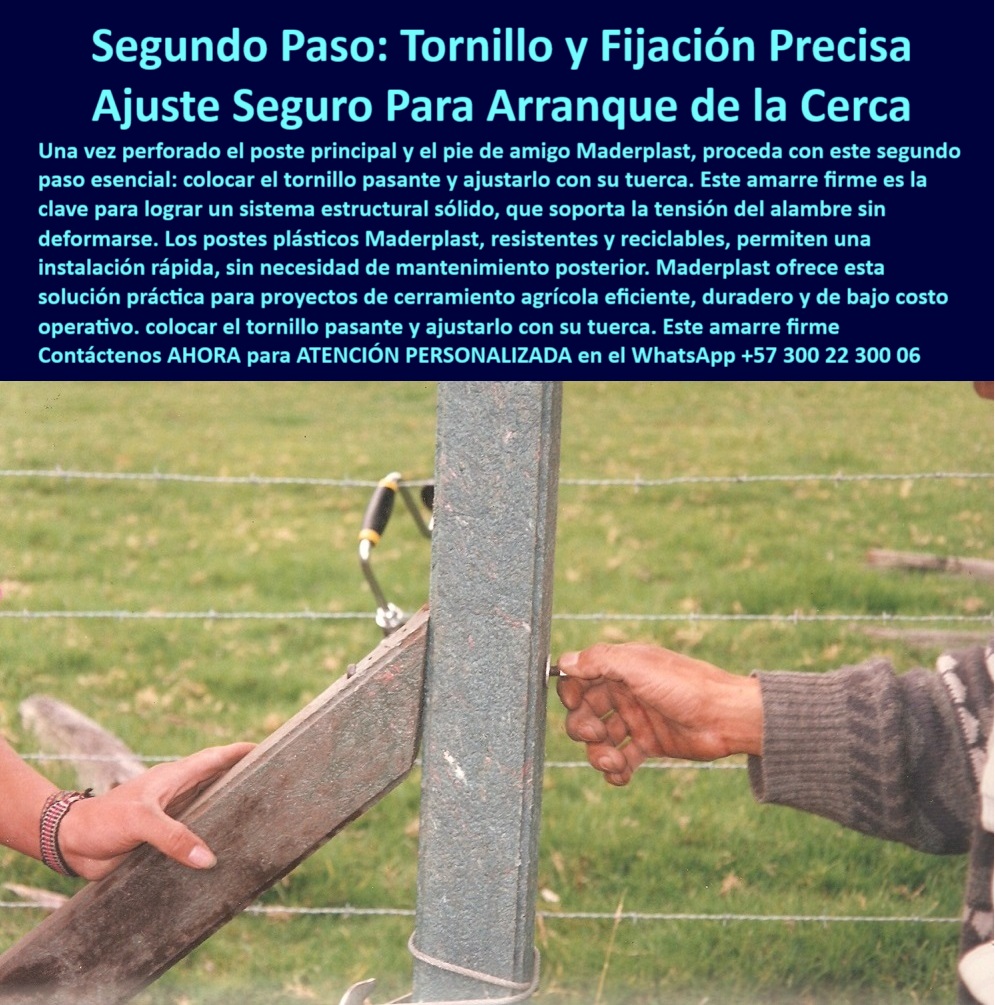 Paso A Paso Instalación Eficiente De Cercas Eléctricas Postes Dieléctricos Maderplast poste para estructura de alta tensión, - poste resistente para humedad y tensión, - poste plástico paso a paso, - poste para cercas eléctricas firmes, - instalación-de-cercas, - Sistema dieléctrico de cerramiento con soporte de tensión, - poste fácil de instalar con tuerca, - poste para instalar pie de amigo, - poste sin concreto para potreros, - ¿Dónde comprar postes plásticos para cercas agrícolas?, - poste sólido reciclado para fincas, - ¿Cómo se instala un poste con pie de amigo paso a paso?, - poste plástico instalación pie de amigo paso a paso, - poste que no se oxida ni deforma, - Fijación de poste agrícola con tornillo pasante firme, - poste reciclado para linderos agrícolas, - Poste técnico para cerramiento de potrero sostenible, - poste para fijación firme en cerca, - poste-plástico-con-tornillo, - tecnología para cercas eléctricas sostenibles y ecológicas, - poste con memoria plástica, - poste-dieléctrico-resistente, - poste-para-ganadería-intensiva, - poste para sistema de cercas técnicas, - Poste con alta resistencia a impacto y deformación, - Poste plástico con tuerca instalada para mayor firmeza, - poste sin aisladores eléctricos, - poste dieléctrico sin mantenimiento, - Instalación de cerca plástica con pie de amigo fijo, - poste plástico con tornillo pasante, - ¿Qué poste sirve para hacer cercas sin concreto?, - poste estructural sin pintura, - poste-pie-de-amigo, - Paso dos de instalación de cerca agrícola eficiente, - poste plástico Cajicá Cundinamarca, - ¿Cuál es el mejor poste para humedad y terrenos blandos?, - Poste sin aisladores eléctricos resistente a humedad, - ¿Cómo instalar cercas eléctricas en fincas con postes reciclados?, - Poste reciclado instalado en finca de Cajicá Cundinamarca, - poste-agricultura-sostenible, - estructura dieléctrica sin concreto para cercas rurales, - poste para instalación con tornillo, - poste-para-zonas-húmedas, - poste-plastico-fijacion-tornillo-cercas-electricas-cajica-maderplast.jpg, - poste Maderplast dieléctrico para linderos, - fijación de poste agrícola reciclado con tornillo, - poste confiable para largo plazo, - En la finca La Campiña, ubicada en Cajicá, Cundinamarca, se documenta el segundo paso esencial en la instalación de cercas eléctricas con postes plásticos Maderplast: la fijación firme del pie de amigo mediante un tornillo pasante ajustado con tuerca. Este punto de unión es clave para garantizar la integridad estructural del cercado, asegurando que la tensión del alambre no deforme el sistema ni lo saque de su eje. A diferencia de los postes tradicionales que requieren concreto o herramientas pesadas, los postes dieléctricos Maderplast ofrecen una alternativa rápida, ligera, resistente y libre de mantenimiento. Fabricados en polímero sólido con memoria plástica, no se oxidan, no se parten y no transmiten corriente, permitiendo una instalación limpia, segura y económica. Esta solución está comprobada en campo, optimizada para condiciones rurales exigentes, especialmente en terrenos húmedos y con alta carga ganadera. Maderplast ofrece tecnología de vanguardia para cerramientos agrícolas eficientes, con más de 150 fincas en Colombia que ya han transformado su manejo de potreros gracias a esta innovación ecológica, reciclable y de larga duración. Los postes Maderplast redefinen la forma de instalar cercas modernas., - poste-sin-mantenimiento, - poste-para-cercas-agrícolas, - poste para fincas ganaderas sostenibles, - poste plástico resistente para agricultura, - sistemas de cierre agrícolas con poste resistente, - poste-reciclado-fincas, - poste dieléctrico para ganadería intensiva, - Poste agrícola con fijación precisa sin concreto, - poste agrícola a bajo costo 0 cómo reducir costos en cercas de fincas, - soluciones en cercas para linderos agrícolas, - sistemas de cierre reciclado para potreros, - postes PP Paso A Paso Instalación Eficiente De Cercas Eléctricas Postes Dieléctricos Maderplast 0 cómo reducir costos en cercas de fincas soluciones en cercas para linderos agrícolas sistemas de cierre reciclado para potreros postes PP poste para estructura de alta tensión, - poste resistente para humedad y tensión, - poste plástico paso a paso, - poste para cercas eléctricas firmes, - instalación-de-cercas, - Sistema dieléctrico de cerramiento con soporte de tensión, - poste fácil de instalar con tuerca, - poste para instalar pie de amigo, - poste sin concreto para potreros, - ¿Dónde comprar postes plásticos para cercas agrícolas?, - poste sólido reciclado para fincas, - ¿Cómo se instala un poste con pie de amigo paso a paso?, - poste plástico instalación pie de amigo paso a paso, - poste que no se oxida ni deforma, - Fijación de poste agrícola con tornillo pasante firme, - poste reciclado para linderos agrícolas, - Poste técnico para cerramiento de potrero sostenible, - poste para fijación firme en cerca, - poste-plástico-con-tornillo, - tecnología para cercas eléctricas sostenibles y ecológicas, - poste con memoria plástica, - poste-dieléctrico-resistente, - poste-para-ganadería-intensiva, - poste para sistema de cercas técnicas, - Poste con alta resistencia a impacto y deformación, - Poste plástico con tuerca instalada para mayor firmeza, - poste sin aisladores eléctricos, - poste dieléctrico sin mantenimiento, - Instalación de cerca plástica con pie de amigo fijo, - poste plástico con tornillo pasante, - ¿Qué poste sirve para hacer cercas sin concreto?, - poste estructural sin pintura, - poste-pie-de-amigo, - Paso dos de instalación de cerca agrícola eficiente, - poste plástico Cajicá Cundinamarca, - ¿Cuál es el mejor poste para humedad y terrenos blandos?, - Poste sin aisladores eléctricos resistente a humedad, - ¿Cómo instalar cercas eléctricas en fincas con postes reciclados?, - Poste reciclado instalado en finca de Cajicá Cundinamarca, - poste-agricultura-sostenible, - estructura dieléctrica sin concreto para cercas rurales, - poste para instalación con tornillo, - poste-para-zonas-húmedas, - poste-plastico-fijacion-tornillo-cercas-electricas-cajica-maderplast.jpg, - poste Maderplast dieléctrico para linderos, - fijación de poste agrícola reciclado con tornillo, - poste confiable para largo plazo, - En la finca La Campiña, ubicada en Cajicá, Cundinamarca, se documenta el segundo paso esencial en la instalación de cercas eléctricas con postes plásticos Maderplast: la fijación firme del pie de amigo mediante un tornillo pasante ajustado con tuerca. Este punto de unión es clave para garantizar la integridad estructural del cercado, asegurando que la tensión del alambre no deforme el sistema ni lo saque de su eje. A diferencia de los postes tradicionales que requieren concreto o herramientas pesadas, los postes dieléctricos Maderplast ofrecen una alternativa rápida, ligera, resistente y libre de mantenimiento. Fabricados en polímero sólido con memoria plástica, no se oxidan, no se parten y no transmiten corriente, permitiendo una instalación limpia, segura y económica. Esta solución está comprobada en campo, optimizada para condiciones rurales exigentes, especialmente en terrenos húmedos y con alta carga ganadera. Maderplast ofrece tecnología de vanguardia para cerramientos agrícolas eficientes, con más de 150 fincas en Colombia que ya han transformado su manejo de potreros gracias a esta innovación ecológica, reciclable y de larga duración. Los postes Maderplast redefinen la forma de instalar cercas modernas., - poste-sin-mantenimiento, - poste-para-cercas-agrícolas, - poste para fincas ganaderas sostenibles, - poste plástico resistente para agricultura, - sistemas de cierre agrícolas con poste resistente, - poste-reciclado-fincas, - poste dieléctrico para ganadería intensiva, - Poste agrícola con fijación precisa sin concreto, - poste agrícola a bajo costo 0 Paso A Paso Instalación Eficiente De Cercas Eléctricas Postes Dieléctricos Maderplast 0 cómo reducir costos en cercas de fincas, - soluciones en cercas para linderos agrícolas, - sistemas de cierre reciclado para potreros, - postes PP