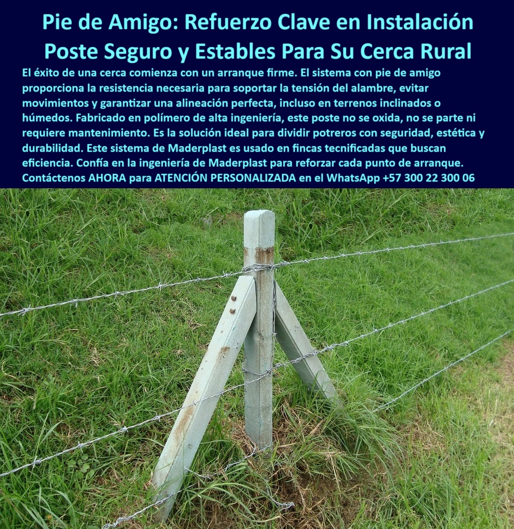 Pie De Amigo Poste De Arranque Poste De Puerta Postes De Broches Maderplast ¿Cómo reforzar los extremos de una cerca ganadera?, - poste firme con memoria estructural elástica, - poste-pie-de-amigo-cajica-poste-arranque-resistente-rural.jpg, - Poste de alta resistencia sin pintura ni óxido en césped, - ¿Qué sistema usar para tensar bien el alambre en esquinas?, - poste de arranque sin concreto ni astillas, - poste plástico para retención de jalones de alambre, - poste plástico para reforzar inicio de cerca ganadera, - ¿Qué poste no se oxida ni se parte para zonas húmedas?, - poste-rural-resistente-a-impactos, - poste de polímero con refuerzo tipo pie de amigo, - poste sin necesidad de aisladores en clima frío, - poste-sin-pintura-ni-reemplazo, - poste de arranque para tramos de cercado ganadero, - poste con instalación eficiente y alineación precisa, - poste técnico reciclable para cerca de alambre, - Poste técnico duradero al lado de conjunto residencial rural, - poste-de-soporte-para-tensado, - poste-técnico-para-división-rural, - Soporte de esquina en cerca rural con más de 10 recambios, - poste para paso de ganado con soporte fijo, - poste angular reforzado para soporte de tensión, - Poste técnico resistente a tensión en borde de potrero, - poste-ganadero-para-alambre-púa, - poste pie de amigo para inicio de cerca eléctrica, - Pie de amigo para alambre templado en finca de Bogotá, - poste con mayor estabilidad que concreto, - instalación profesional de postes ganaderos sin mantenimiento, - poste estructural sin corrosión para zonas húmedas, - poste-pie-de-amigo-reforzado, - poste-fijo-para-autopistas-ganaderas, - ¿Cuál es el mejor poste para arrancar cercas de alambre?, - poste funcional en pastos húmedos y quebrados, - poste reciclado resistente para terrenos inclinados, - Cerca de alambre reforzada con ángulo plástico de soporte, - poste reciclable estructural para ganadería rural, - poste rígido y liviano para terrenos blandos, - poste para dividir potreros con tensión permanente, - poste técnico con ángulo estructural reforzado, - poste rural sin oxidación ni deformación, - poste antivibración para ganaderías de altura, - Poste con pie de amigo instalado frente a urbanización en Cajicá, - Estructura de soporte en inicio de cerca visible desde vía, - poste angular sin metal ni madera tratada, - poste para esquinas y puntos de tensión intensiva, - poste con soporte angular contra desplazamientos, - poste-de-arranque-con-ángulo, - poste sin pintura ni cambio en décadas ganaderas, - ¿Qué poste lleva refuerzo tipo pie de amigo?, - poste para instalar cercas sin mantenimiento rural, - poste-reciclado-sin-mantenimiento, - La imagen muestra un poste con sistema pie de amigo instalado hace más de 33 años en Cajicá, Cundinamarca, frente al conjunto residencial Aposentos, a la vista de miles de viajeros que transitan por la autopista Bogotá-Cajicá. Este punto de anclaje marca el inicio de una cerca de alambre que ha soportado más de 10 reposiciones de hilo sin que el poste se haya deteriorado. Fabricado en polímero técnico reforzado, ofrece una alineación perfecta, resistencia estructural, y estabilidad en terrenos inclinados o húmedos. No se oxida, no se parte ni necesita pintura o mantenimiento, incluso después de décadas de exposición al clima. Su ángulo de refuerzo garantiza firmeza ante jalones y tensión de alambres, lo que lo hace ideal para arranques, esquinas y puertas de paso. Esta instalación es una prueba real de que existen soluciones definitivas, eficientes y duraderas para cercados rurales que evitan el uso de concreto, madera o metal y eliminan gastos repetitivos. Optimiza tu inversión rural con tecnología probada y soporte técnico comprobado., - poste largo para cercas en autopistas rurales, - poste plástico duradero para esquinas de alambre, - Poste estructural reciclado en pradera inclinada sin fallas, - poste-para-esquinas-de-cerca, - Refuerzo angular instalado hace 33 años sigue en servicio0 cómo reforzar puntos de arranque, - guía templar cerca eléctrica correctamente, - instalación segura de postes ganaderos, - formas y perfiles Pie De Amigo Pie De Amigo Poste De Arranque Poste De Puerta Postes De Broches Maderplast 0 cómo reforzar puntos de arranque guía templar cerca eléctrica correctamente instalación segura de postes ganaderos formas y perfiles Pie De Amigo ¿Cómo reforzar los extremos de una cerca ganadera?, - poste firme con memoria estructural elástica, - poste-pie-de-amigo-cajica-poste-arranque-resistente-rural.jpg, - Poste de alta resistencia sin pintura ni óxido en césped, - ¿Qué sistema usar para tensar bien el alambre en esquinas?, - poste de arranque sin concreto ni astillas, - poste plástico para retención de jalones de alambre, - poste plástico para reforzar inicio de cerca ganadera, - ¿Qué poste no se oxida ni se parte para zonas húmedas?, - poste-rural-resistente-a-impactos, - poste de polímero con refuerzo tipo pie de amigo, - poste sin necesidad de aisladores en clima frío, - poste-sin-pintura-ni-reemplazo, - poste de arranque para tramos de cercado ganadero, - poste con instalación eficiente y alineación precisa, - poste técnico reciclable para cerca de alambre, - Poste técnico duradero al lado de conjunto residencial rural, - poste-de-soporte-para-tensado, - poste-técnico-para-división-rural, - Soporte de esquina en cerca rural con más de 10 recambios, - poste para paso de ganado con soporte fijo, - poste angular reforzado para soporte de tensión, - Poste técnico resistente a tensión en borde de potrero, - poste-ganadero-para-alambre-púa, - poste pie de amigo para inicio de cerca eléctrica, - Pie de amigo para alambre templado en finca de Bogotá, - poste con mayor estabilidad que concreto, - instalación profesional de postes ganaderos sin mantenimiento, - poste estructural sin corrosión para zonas húmedas, - poste-pie-de-amigo-reforzado, - poste-fijo-para-autopistas-ganaderas, - ¿Cuál es el mejor poste para arrancar cercas de alambre?, - poste funcional en pastos húmedos y quebrados, - poste reciclado resistente para terrenos inclinados, - Cerca de alambre reforzada con ángulo plástico de soporte, - poste reciclable estructural para ganadería rural, - poste rígido y liviano para terrenos blandos, - poste para dividir potreros con tensión permanente, - poste técnico con ángulo estructural reforzado, - poste rural sin oxidación ni deformación, - poste antivibración para ganaderías de altura, - Poste con pie de amigo instalado frente a urbanización en Cajicá, - Estructura de soporte en inicio de cerca visible desde vía, - poste angular sin metal ni madera tratada, - poste para esquinas y puntos de tensión intensiva, - poste con soporte angular contra desplazamientos, - poste-de-arranque-con-ángulo, - poste sin pintura ni cambio en décadas ganaderas, - ¿Qué poste lleva refuerzo tipo pie de amigo?, - poste para instalar cercas sin mantenimiento rural, - poste-reciclado-sin-mantenimiento, - La imagen muestra un poste con sistema pie de amigo instalado hace más de 33 años en Cajicá, Cundinamarca, frente al conjunto residencial Aposentos, a la vista de miles de viajeros que transitan por la autopista Bogotá-Cajicá. Este punto de anclaje marca el inicio de una cerca de alambre que ha soportado más de 10 reposiciones de hilo sin que el poste se haya deteriorado. Fabricado en polímero técnico reforzado, ofrece una alineación perfecta, resistencia estructural, y estabilidad en terrenos inclinados o húmedos. No se oxida, no se parte ni necesita pintura o mantenimiento, incluso después de décadas de exposición al clima. Su ángulo de refuerzo garantiza firmeza ante jalones y tensión de alambres, lo que lo hace ideal para arranques, esquinas y puertas de paso. Esta instalación es una prueba real de que existen soluciones definitivas, eficientes y duraderas para cercados rurales que evitan el uso de concreto, madera o metal y eliminan gastos repetitivos. Optimiza tu inversión rural con tecnología probada y soporte técnico comprobado., - poste largo para cercas en autopistas rurales, - poste plástico duradero para esquinas de alambre, - Poste estructural reciclado en pradera inclinada sin fallas, - poste-para-esquinas-de-cerca, - Refuerzo angular instalado hace 33 años sigue en servicio 0 Pie De Amigo Poste De Arranque Poste De Puerta Postes De Broches Maderplast 0 cómo reforzar puntos de arranque, - guía templar cerca eléctrica correctamente, - instalación segura de postes ganaderos, - formas y perfiles Pie De Amigo