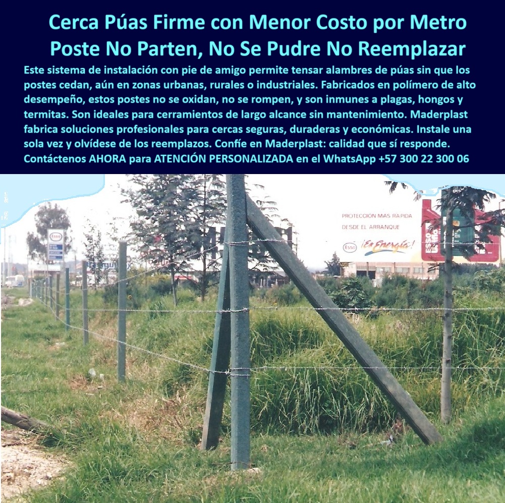 Pie De Amigo Poste De Arranque Poste De Puerta Postes De Broches Maderplast poste sin herrumbre para ambientes agresivos, - poste sostenible visible por más de 30 años, - poste-pie-amigo-alambre-puas-30-años-cajicá-maderplast.jpg, - poste-libre-de-plagas-y-hongos, - poste-cerca-sin-mantenimiento, - poste plástico inmune a plagas, hongos y humedad, - poste sin reemplazo para cierre perimetral ganadero, - Poste de arranque plástico con pie de amigo sin mantenimiento, - poste-pie-de-amigo-plástico, - cerca económica con poste que no se parte ni astilla, - Poste sin deformación frente a jalones y humedad, - cercas-urbanas-y-rurales-resistentes, - Poste para alambre sin oxidación ni desgaste visible, - ¿Cómo instalar pie de amigo para tensar alambre?, - poste para sistemas de cerramiento con bajo costo, - ¿Qué poste funciona mejor en zona urbana y rural?, - poste inmune a plagas y humedad para potreros, - poste para cercas en vía pública sin deterioro, - poste para potrero resistente al paso del tiempo, - Cerramiento técnico con pie de amigo perfectamente funcional, - poste para cercas firmes con alambre de púas, - poste pie de amigo plástico sin oxidación ni pudrición, - poste de arranque para cercas industriales resistentes, - poste para ganado que no se cae ni se dobla, - poste para tensado de cercas rurales de larga duración, - Cercado urbano duradero con postes reciclables Maderplast, - poste plástico instalado hace 30 años sin fallas, - cercas con menor costo por metro lineal, - poste libre de mantenimiento para cerca ganadera, - poste para alambre de púas sin aisladores ni pintura, - Sistema de cercado urbano con alambre tenso y postes sólidos, - Postes firmes instalados hace 30 años aún en servicio activo, - poste-tecnología-maderplast, - cercado rural con postes sin mantenimiento, - sistema de pie de amigo para tensar cercas seguras, - postes duraderos para zonas urbanas y rurales, - poste-inquebrantable-con-tensores, - poste plástico para sistemas perimetrales firmes, - Poste que soporta tensión con diseño estructural confiable, - poste con memoria plástica para jalones extremos, - sistema de cercado técnico con poste reciclable, - pie de amigo para postes plásticos de cercas, - ¿Qué poste para cerca tiene más de 30 años de uso?, - cerca-con-alambre-de-púas-firme, - poste-alternativo-a-la-madera, - poste-plástico-sin-pintura-ni-óxido, - Postes sin pintura en ambiente de alta exposición urbana, - poste para alambre de púas en zona urbana, - La imagen evidencia una cerca con más de 30 años de instalada frente al conjunto Apocentos en la vía Cajicá–Bogotá, sin que los postes hayan necesitado mantenimiento, pintura o reemplazo. El sistema usa postes plásticos con pie de amigo, una solución técnica que asegura el tensado del alambre de púas sin que los postes cedan o se inclinen, incluso en zonas urbanas con alta exposición ambiental. Estos postes, fabricados en polímero estructural de alta ingeniería, son inmunes a la corrosión, plagas, hongos y fracturas. Su instalación garantiza estabilidad y estética profesional por décadas. Maderplast demuestra aquí que su tecnología no solo resiste el paso del tiempo, sino que también reduce costos operativos, mano de obra y materiales adicionales. Es la alternativa más sólida y confiable a los postes de concreto, madera inmunizada o metálicos. Postes que no se parten, no se pudren, no se reemplazan. ¡Y están a la vista de todos!, - poste estructural de alta ingeniería para ganadería, - ¿Qué poste para cerca no se oxida ni parte?, - alternativa a poste de madera o concreto quebrado, - Cerca urbana con postes plásticos rectos y bien alineados, - ¿Cuál es el poste que no necesita reemplazo?, - poste que no se raja ni se dobla en tensión, - poste-plástico-30-años-instalado, - poste estructural sin químicos para cerca eléctrica0 poste libre de plagas y termitas para potreros, - tensado alambre eléctrico, - postes plásticos para cercas con tejido, - alternativa segura a postes de Pie Pie De Amigo Poste De Arranque Poste De Puerta Postes De Broches Maderplast 0 poste libre de plagas y termitas para potreros tensado alambre eléctrico postes plásticos para cercas con tejido alternativa segura a postes de Pie poste sin herrumbre para ambientes agresivos, - poste sostenible visible por más de 30 años, - poste-pie-amigo-alambre-puas-30-años-cajicá-maderplast.jpg, - poste-libre-de-plagas-y-hongos, - poste-cerca-sin-mantenimiento, - poste plástico inmune a plagas, hongos y humedad, - poste sin reemplazo para cierre perimetral ganadero, - Poste de arranque plástico con pie de amigo sin mantenimiento, - poste-pie-de-amigo-plástico, - cerca económica con poste que no se parte ni astilla, - Poste sin deformación frente a jalones y humedad, - cercas-urbanas-y-rurales-resistentes, - Poste para alambre sin oxidación ni desgaste visible, - ¿Cómo instalar pie de amigo para tensar alambre?, - poste para sistemas de cerramiento con bajo costo, - ¿Qué poste funciona mejor en zona urbana y rural?, - poste inmune a plagas y humedad para potreros, - poste para cercas en vía pública sin deterioro, - poste para potrero resistente al paso del tiempo, - Cerramiento técnico con pie de amigo perfectamente funcional, - poste para cercas firmes con alambre de púas, - poste pie de amigo plástico sin oxidación ni pudrición, - poste de arranque para cercas industriales resistentes, - poste para ganado que no se cae ni se dobla, - poste para tensado de cercas rurales de larga duración, - Cercado urbano duradero con postes reciclables Maderplast, - poste plástico instalado hace 30 años sin fallas, - cercas con menor costo por metro lineal, - poste libre de mantenimiento para cerca ganadera, - poste para alambre de púas sin aisladores ni pintura, - Sistema de cercado urbano con alambre tenso y postes sólidos, - Postes firmes instalados hace 30 años aún en servicio activo, - poste-tecnología-maderplast, - cercado rural con postes sin mantenimiento, - sistema de pie de amigo para tensar cercas seguras, - postes duraderos para zonas urbanas y rurales, - poste-inquebrantable-con-tensores, - poste plástico para sistemas perimetrales firmes, - Poste que soporta tensión con diseño estructural confiable, - poste con memoria plástica para jalones extremos, - sistema de cercado técnico con poste reciclable, - pie de amigo para postes plásticos de cercas, - ¿Qué poste para cerca tiene más de 30 años de uso?, - cerca-con-alambre-de-púas-firme, - poste-alternativo-a-la-madera, - poste-plástico-sin-pintura-ni-óxido, - Postes sin pintura en ambiente de alta exposición urbana, - poste para alambre de púas en zona urbana, - La imagen evidencia una cerca con más de 30 años de instalada frente al conjunto Apocentos en la vía Cajicá–Bogotá, sin que los postes hayan necesitado mantenimiento, pintura o reemplazo. El sistema usa postes plásticos con pie de amigo, una solución técnica que asegura el tensado del alambre de púas sin que los postes cedan o se inclinen, incluso en zonas urbanas con alta exposición ambiental. Estos postes, fabricados en polímero estructural de alta ingeniería, son inmunes a la corrosión, plagas, hongos y fracturas. Su instalación garantiza estabilidad y estética profesional por décadas. Maderplast demuestra aquí que su tecnología no solo resiste el paso del tiempo, sino que también reduce costos operativos, mano de obra y materiales adicionales. Es la alternativa más sólida y confiable a los postes de concreto, madera inmunizada o metálicos. Postes que no se parten, no se pudren, no se reemplazan. ¡Y están a la vista de todos!, - poste estructural de alta ingeniería para ganadería, - ¿Qué poste para cerca no se oxida ni parte?, - alternativa a poste de madera o concreto quebrado, - Cerca urbana con postes plásticos rectos y bien alineados, - ¿Cuál es el poste que no necesita reemplazo?, - poste que no se raja ni se dobla en tensión, - poste-plástico-30-años-instalado, - poste estructural sin químicos para cerca eléctrica 0 Pie De Amigo Poste De Arranque Poste De Puerta Postes De Broches Maderplast 0 poste libre de plagas y termitas para potreros, - tensado alambre eléctrico, - postes plásticos para cercas con tejido, - alternativa segura a postes de Pie