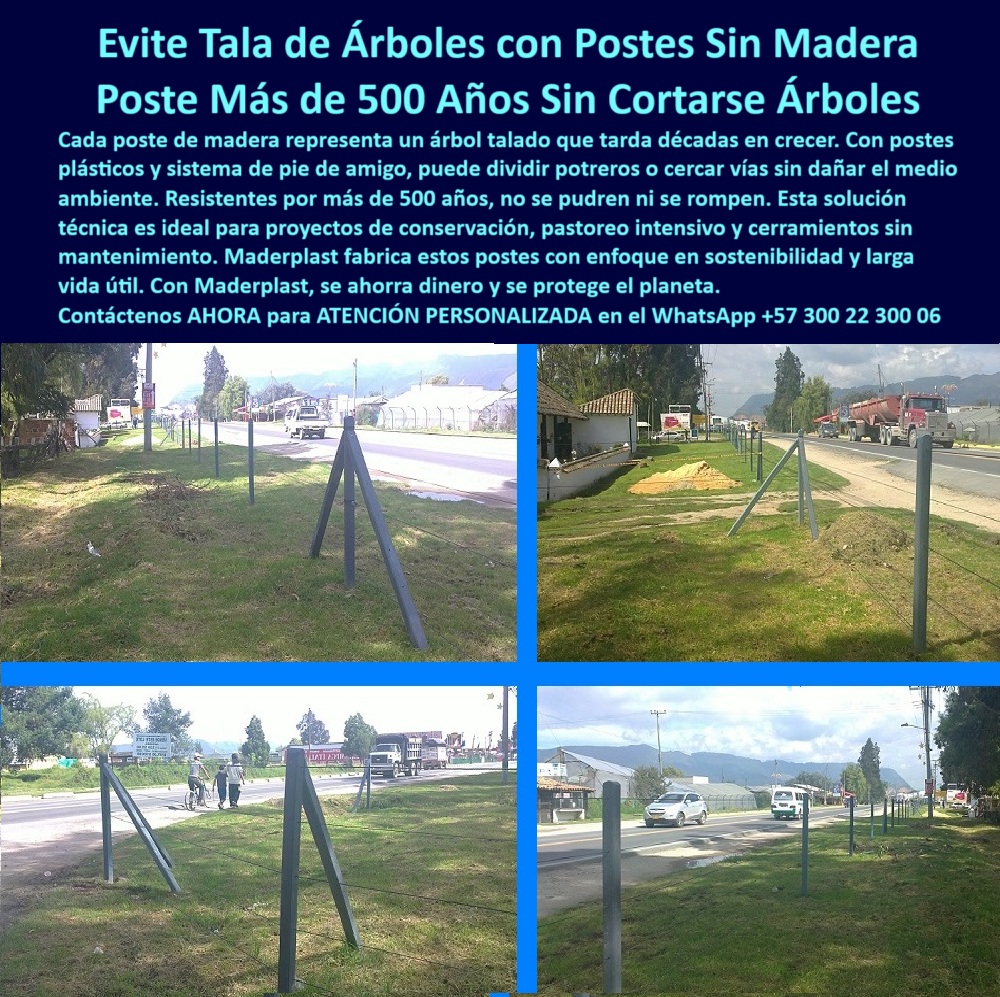 Pie De Amigo Poste De Arranque Poste De Puerta Postes De Broches Maderplast poste sin madera para instalar pie de amigo resistente, - poste fuerte para zonas urbanas sin tala de árboles, - poste libre de mantenimiento para proyectos agroambientales, - cercado-sin-tala-de-árboles, - Alambre tenso sin curvaturas ni cedimientos, - poste-sin-pintura-ni-desgaste, - poste de conservación ambiental para ganadería intensiva, - alternativas a postes de madera para cerramientos, - poste resistente a humedad para uso sin deforestación, - ¿Qué postes duran más de 500 años?, - La foto muestra una imagen real de instalación de postes plásticos con sistema pie de amigo, ubicados al borde de una vía rural en zona verde. Se observa claramente que no se ha talado ningún árbol para permitir la instalación, demostrando que este sistema conserva el entorno natural sin comprometer la firmeza del cerramiento. Los postes Maderplast están hechos de polímero reciclado, lo que los convierte en una solución ecológica que no se parte, no se pudre y no se oxida, incluso después de décadas. Su forma cuadrada y color sobrio combinan perfectamente con el paisaje natural. Este sistema de postes Maderplast está diseñado para durar más de 500 años, siendo ideal para proyectos de conservación, ganadería sostenible o cerramientos urbanos sin tala. Además, eliminan la necesidad de pintura, mantenimiento o herramientas pesadas. Su diseño técnico permite anclaje perfecto con pie de amigo, incluso en suelos blandos, sin dañar el entorno. Con una sola inversión se garantiza protección sin impacto ambiental., - poste-para-cercas-ambientales, - poste plástico sin cortar árboles para cerramiento rural, - ¿Dónde comprar postes ecológicos para potreros?, - poste sin madera para proteger la biodiversidad, - sistema de pie de amigo sin impacto ambiental, - Barrotes plásticos alineados en terreno verde, - Sistema de postes alineados junto a vía urbana, - poste estructural para cercas verdes y ecológicas, - poste alternativo a madera para cercas ganaderas, - poste para conservación de ecosistemas rurales, - poste-plastico-sin-talar-arboles-cerramiento-ecologico.jpg, - poste-sin-mantenimiento-ecológico, - poste plástico para conservar árboles en potreros, - poste para vías rurales sin cortar vegetación nativa, - poste que no requiere pintura ni reemplazos frecuentes, - postes duraderos para vías rurales sostenibles, - poste-ecológico-sin-madera, - ¿Qué poste usar sin talar árboles?, - poste seguro y firme para zonas protegidas, - poste-firme-contra-la-deforestación, - poste-sostenible-para-potreros, - ¿Cómo evitar tala de árboles en cercas?, - cercas ecológicas sin tala de árboles, - poste para protección vial ecológica, - cerramiento-verde-de-polímero, - Instalación de poste estructural en zona protegida, - poste duradero más de 500 años sin intervención, - poste de alta duración para cercas sin impacto ambiental, - Polímero reciclado simulando cerca sin madera, - poste de polímero ecológico reciclado, - Paisaje despejado sin intervención de vegetación, - poste-con-pie-de-amigo, - poste para linderos sostenibles sin productos tóxicos, - poste reciclado que evita la deforestación rural, - Sistema modular con múltiples pies de amigo, - poste de plástico para proyectos de conservación, - poste con instalación sin concreto y sin árboles, - Pie de amigo a 45° fijando poste firme en tierra, - Postes grises sobre césped sin árboles cercanos, - ¿Postes para cerramiento ambientalmente sostenible?, - poste-plástico-de-larga-duración, - Postes verticales instalados sin cemento, - poste sostenible para control de acceso rural, - poste sin grietas ni deterioro por plagas, - poste para cerramientos institucionales sin tala, - poste ecológico para dividir potreros sin dañar el ecosistema 0 poste plástico para pastoreo fuerte, - tensión alambre final, - estacones plásticos para conservación de pastos, - poste de alta resistencia, - cerramientos Pie De Amigo Poste De Arranque Poste De Puerta Postes De Broches Maderplast 0 poste plástico para pastoreo fuerte tensión alambre final estacones plásticos para conservación de pastos poste de alta resistencia cerramientos poste sin madera para instalar pie de amigo resistente, - poste fuerte para zonas urbanas sin tala de árboles, - poste libre de mantenimiento para proyectos agroambientales, - cercado-sin-tala-de-árboles, - Alambre tenso sin curvaturas ni cedimientos, - poste-sin-pintura-ni-desgaste, - poste de conservación ambiental para ganadería intensiva, - alternativas a postes de madera para cerramientos, - poste resistente a humedad para uso sin deforestación, - ¿Qué postes duran más de 500 años?, - La foto muestra una imagen real de instalación de postes plásticos con sistema pie de amigo, ubicados al borde de una vía rural en zona verde. Se observa claramente que no se ha talado ningún árbol para permitir la instalación, demostrando que este sistema conserva el entorno natural sin comprometer la firmeza del cerramiento. Los postes Maderplast están hechos de polímero reciclado, lo que los convierte en una solución ecológica que no se parte, no se pudre y no se oxida, incluso después de décadas. Su forma cuadrada y color sobrio combinan perfectamente con el paisaje natural. Este sistema de postes Maderplast está diseñado para durar más de 500 años, siendo ideal para proyectos de conservación, ganadería sostenible o cerramientos urbanos sin tala. Además, eliminan la necesidad de pintura, mantenimiento o herramientas pesadas. Su diseño técnico permite anclaje perfecto con pie de amigo, incluso en suelos blandos, sin dañar el entorno. Con una sola inversión se garantiza protección sin impacto ambiental., - poste-para-cercas-ambientales, - poste plástico sin cortar árboles para cerramiento rural, - ¿Dónde comprar postes ecológicos para potreros?, - poste sin madera para proteger la biodiversidad, - sistema de pie de amigo sin impacto ambiental, - Barrotes plásticos alineados en terreno verde, - Sistema de postes alineados junto a vía urbana, - poste estructural para cercas verdes y ecológicas, - poste alternativo a madera para cercas ganaderas, - poste para conservación de ecosistemas rurales, - poste-plastico-sin-talar-arboles-cerramiento-ecologico.jpg, - poste-sin-mantenimiento-ecológico, - poste plástico para conservar árboles en potreros, - poste para vías rurales sin cortar vegetación nativa, - poste que no requiere pintura ni reemplazos frecuentes, - postes duraderos para vías rurales sostenibles, - poste-ecológico-sin-madera, - ¿Qué poste usar sin talar árboles?, - poste seguro y firme para zonas protegidas, - poste-firme-contra-la-deforestación, - poste-sostenible-para-potreros, - ¿Cómo evitar tala de árboles en cercas?, - cercas ecológicas sin tala de árboles, - poste para protección vial ecológica, - cerramiento-verde-de-polímero, - Instalación de poste estructural en zona protegida, - poste duradero más de 500 años sin intervención, - poste de alta duración para cercas sin impacto ambiental, - Polímero reciclado simulando cerca sin madera, - poste de polímero ecológico reciclado, - Paisaje despejado sin intervención de vegetación, - poste-con-pie-de-amigo, - poste para linderos sostenibles sin productos tóxicos, - poste reciclado que evita la deforestación rural, - Sistema modular con múltiples pies de amigo, - poste de plástico para proyectos de conservación, - poste con instalación sin concreto y sin árboles, - Pie de amigo a 45° fijando poste firme en tierra, - Postes grises sobre césped sin árboles cercanos, - ¿Postes para cerramiento ambientalmente sostenible?, - poste-plástico-de-larga-duración, - Postes verticales instalados sin cemento, - poste sostenible para control de acceso rural, - poste sin grietas ni deterioro por plagas, - poste para cerramientos institucionales sin tala, - poste ecológico para dividir potreros sin dañar el ecosistema 0 Pie De Amigo Poste De Arranque Poste De Puerta Postes De Broches Maderplast 0 poste plástico para pastoreo fuerte, - tensión alambre final, - estacones plásticos para conservación de pastos, - poste de alta resistencia, - cerramientos