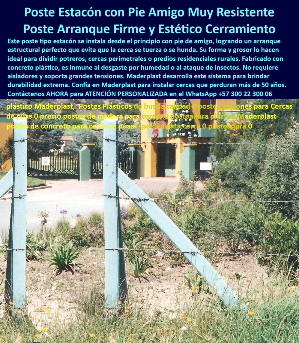 Pie De Amigo Poste De Arranque Poste De Puerta Postes De Broches Maderplast Poste plástico sin pintura con ángulo estructural duradero, - poste-de-arranque-resistente, - ¿Cuál es el mejor poste para ganado en Colombia?, - Poste plástico ideal para zonas húmedas sin mantenimiento, - poste Maderplast con soporte estructural, - Poste reciclado con forma cuadrada y soporte en diagonal, - poste con memoria plástica estructural, - ¿Qué es un poste pie de amigo y para qué sirve?, - poste-plástico-pie-amigo, - poste para terreno rural inclinado, - poste con soporte lateral rural, - poste-de-uso-ganadero-extremo, - Poste sin aisladores para división de terrenos ganaderos, - ¿Dónde comprar postes plásticos que no se pudren?, - poste de alta resistencia para ganado, - poste-con-soporte-lateral, - poste plástico para reemplazar concreto, - poste-para-cerca-húmeda, - Poste de arranque plástico Maderplast con soporte pie de amigo, - poste-maderplast-resistente, - poste-reciclado-zona-rural, - poste estructural sin aisladores, - ¿Qué poste usar en terrenos húmedos para cercas?, - poste plástico para ganadería intensiva, - poste-sin-pintura-ni-óxido, - ¿Qué poste dura más de 30 años sin mantenimiento?, - poste estético de alta duración, - poste duradero para entrada de finca, - poste de plástico instalado frente a conjunto residencial, - Poste Maderplast enterrado firme para linderos viales, - poste para cerca perimetral reciclado, - Poste firme de polímero reciclado para potrero sin concreto, - poste para zonas rurales con humedad, - poste para linderos de finca, - poste de polímero con resistencia a jalones, - poste reciclado con pie estructural en zona rural, - poste de arranque plástico Maderplast en finca, - poste fuerte para dividir potreros, - poste sin pintura sin óxido, - poste-contra-plagas-y-humedad, - poste-con-memoria-plástica, - poste plásticos durables en zonas húmedas, - poste antivandálico de polímero, - Poste para cercas eléctricas rurales en terreno inclinado, - Poste rural instalado frente a conjunto en Bogotá Cajicá, - poste reciclado sin mantenimiento, - poste plástico pie de amigo resistente, - Poste estructural que resiste tracción y humedad por décadas, - En la autopista Bogotá–Cajicá, justo frente al conjunto Aposentos, se yergue un poste tipo pie de amigo Maderplast, con más de 30 años de servicio impecable. El color gris pálido envejecido por el sol revela la nobleza del polímero reciclado que no se agrieta ni se desmorona. Anclado firmemente al suelo, este poste mantiene tenso un alambrado que ha sido reemplazado cinco veces, sin comprometer la estabilidad del cerramiento. Su ángulo de soporte lateral es una firma técnica: no deja que el cercado se tuerza, aún frente a los jalones del ganado o la humedad constante. Fabricado sin concreto y sin madera, es una solución moderna, estética y estructuralmente superior. Maderplast diseñó este tipo de poste para quienes buscan durabilidad, sin mantenimiento, sin excusas. Es la columna vertebral ideal para potreros, fincas, caminos y entradas residenciales. No requiere aisladores, ni pintura, ni refuerzos. Es más que un poste: es una inversión inteligente y definitiva, validada en terreno real., - poste de arranque para cerco eléctrico, - poste plástico económico con pie de amigo, - poste Maderplast reciclado firme, - poste sin pudrición ni astillas, - poste plásticos para potreros húmedos, - poste sin concreto para cercas eléctricas, - poste para huertas ecológicas 0 postes enterrados durables, - Validación de poste reciclado frente a cargas de compresión, - postes para ganadería sin necesidad de aisladores, - soporte PP Pie De Amigo Poste De Arranque Poste De Puerta Postes De Broches Maderplast 0 postes enterrados durables Validación de poste reciclado frente a cargas de compresión postes para ganadería sin necesidad de aisladores soporte PP Poste plástico sin pintura con ángulo estructural duradero, - poste-de-arranque-resistente, - ¿Cuál es el mejor poste para ganado en Colombia?, - Poste plástico ideal para zonas húmedas sin mantenimiento, - poste Maderplast con soporte estructural, - Poste reciclado con forma cuadrada y soporte en diagonal, - poste con memoria plástica estructural, - ¿Qué es un poste pie de amigo y para qué sirve?, - poste-plástico-pie-amigo, - poste para terreno rural inclinado, - poste con soporte lateral rural, - poste-de-uso-ganadero-extremo, - Poste sin aisladores para división de terrenos ganaderos, - ¿Dónde comprar postes plásticos que no se pudren?, - poste de alta resistencia para ganado, - poste-con-soporte-lateral, - poste plástico para reemplazar concreto, - poste-para-cerca-húmeda, - Poste de arranque plástico Maderplast con soporte pie de amigo, - poste-maderplast-resistente, - poste-reciclado-zona-rural, - poste estructural sin aisladores, - ¿Qué poste usar en terrenos húmedos para cercas?, - poste plástico para ganadería intensiva, - poste-sin-pintura-ni-óxido, - ¿Qué poste dura más de 30 años sin mantenimiento?, - poste estético de alta duración, - poste duradero para entrada de finca, - poste de plástico instalado frente a conjunto residencial, - Poste Maderplast enterrado firme para linderos viales, - poste para cerca perimetral reciclado, - Poste firme de polímero reciclado para potrero sin concreto, - poste para zonas rurales con humedad, - poste para linderos de finca, - poste de polímero con resistencia a jalones, - poste reciclado con pie estructural en zona rural, - poste de arranque plástico Maderplast en finca, - poste fuerte para dividir potreros, - poste sin pintura sin óxido, - poste-contra-plagas-y-humedad, - poste-con-memoria-plástica, - poste plásticos durables en zonas húmedas, - poste antivandálico de polímero, - Poste para cercas eléctricas rurales en terreno inclinado, - Poste rural instalado frente a conjunto en Bogotá Cajicá, - poste reciclado sin mantenimiento, - poste plástico pie de amigo resistente, - Poste estructural que resiste tracción y humedad por décadas, - En la autopista Bogotá–Cajicá, justo frente al conjunto Aposentos, se yergue un poste tipo pie de amigo Maderplast, con más de 30 años de servicio impecable. El color gris pálido envejecido por el sol revela la nobleza del polímero reciclado que no se agrieta ni se desmorona. Anclado firmemente al suelo, este poste mantiene tenso un alambrado que ha sido reemplazado cinco veces, sin comprometer la estabilidad del cerramiento. Su ángulo de soporte lateral es una firma técnica: no deja que el cercado se tuerza, aún frente a los jalones del ganado o la humedad constante. Fabricado sin concreto y sin madera, es una solución moderna, estética y estructuralmente superior. Maderplast diseñó este tipo de poste para quienes buscan durabilidad, sin mantenimiento, sin excusas. Es la columna vertebral ideal para potreros, fincas, caminos y entradas residenciales. No requiere aisladores, ni pintura, ni refuerzos. Es más que un poste: es una inversión inteligente y definitiva, validada en terreno real., - poste de arranque para cerco eléctrico, - poste plástico económico con pie de amigo, - poste Maderplast reciclado firme, - poste sin pudrición ni astillas, - poste plásticos para potreros húmedos, - poste sin concreto para cercas eléctricas, - poste para huertas ecológicas 0 Pie De Amigo Poste De Arranque Poste De Puerta Postes De Broches Maderplast 0 postes enterrados durables, - Validación de poste reciclado frente a cargas de compresión, - postes para ganadería sin necesidad de aisladores, - soporte PP