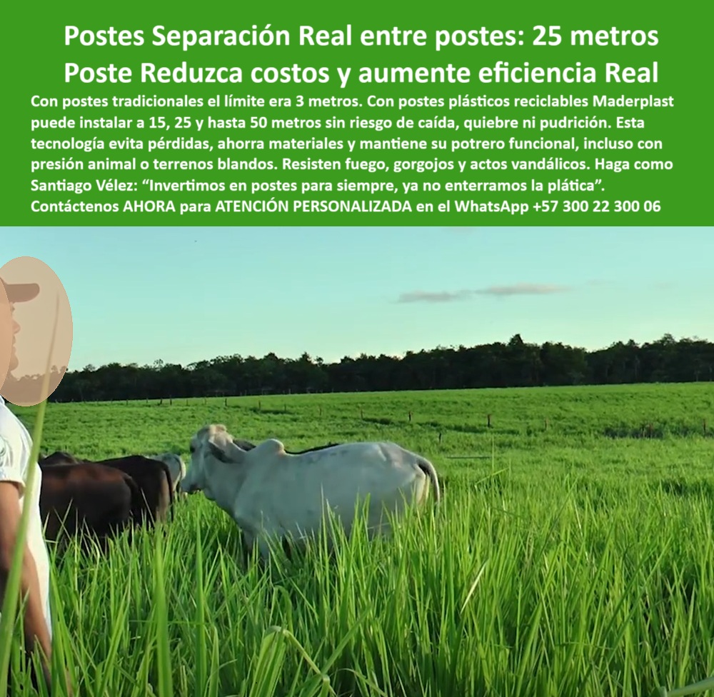 Poste Cercado Poste Perimetral Poste Delimitador Poste Rollizo Fazenda Maderplast Poste de polímero reciclado para líneas ganaderas, - poste firme para delimitación de fincas verdes, - Poste resistente a impactos para ganado en pastoreo intensivo, - poste verde reciclado para agricultura moderna, - poste-ecológico-para-carga-animal-intensiva, - poste con durabilidad para sistemas de rotación, - poste-plastico-cerca-rural-separacion-25-metros-eficiente.jpg, - poste dieléctrico para cercas eléctricas rurales, - poste que sustituye madera en pastoreo intensivo, - poste que no se quiebra en zonas blandas, - poste plástico sólido para terrenos húmedos y blandos, - poste que se instala en líneas largas sin concreto, - poste estructural sin mantenimiento para ganadería, - poste plástico anti vandalismo y sin deformaciones, - poste sin pintura ni mantenimiento adicional, - poste con validación mecánica para potreros amplios, - ¿Cuál es el mejor poste para reducir mantenimiento de cercas?, - poste-antivandálico-reciclado-de-larga-vida, - Recomendación de poste que reduzca costos en cercamiento agrícola, - poste-para-cercas-a-25-metros, - Poste de polímero estructural para dividir potreros blandos y húmedos, - poste de alta separación para reducción de materiales, - poste que soporta presión de animales grandes, - Poste largo instalado sin concreto ni soporte adicional, - ¿Dónde comprar poste plástico que no se parte ni se oxida?, - ¿Qué poste me ahorra materiales al hacer cercas ganaderas?, - poste que evita pudrición y oxidación ganadera, - Poste ecológico que no se oxida para potreros rurales, - Poste plástico verde instalado en potrero ganadero húmedo, - La imagen presenta una línea de postes plásticos reciclados con separación real de 25 metros, perfectamente alineados en una pradera ganadera. Estos postes fabricados por Maderplast están diseñados para resistir impactos, humedad, presión animal y vandalismo, sin agrietarse ni oxidarse. Ideales para reducir el uso de materiales y lograr cercas más extensas y rentables, los postes Maderplast representan la mejor inversión para dividir potreros en fincas rurales tecnificadas, combinando sostenibilidad con eficiencia operativa., - poste-reciclado-para-división-de-potreros, - Postes separados a 25 metros sobre pradera extensa, - poste reciclable para linderos agrícolas sostenibles, - Poste reciclado para cercas ganaderas con separación de 25 metros, - poste que evita hundimiento en terrenos fangosos, - poste resistente al fuego para cerramiento ganadero, - Lote agrícola cercado con poste anti impacto y reciclable, - poste-plástico-resistente-a-impactos-ganaderos, - poste-liviano-para-terrenos-húmedos, - poste plástico para separación de 25 metros en potrero, - poste-dieléctrico-para-pastoreo-tecnificado, - poste-económico-con-alta-separación, - poste de impacto controlado para carga animal intensiva, - poste reciclado para división de praderas extensas, - poste para reducir costos de cercado rural, - poste duradero para agricultores tecnificados, - Poste estructural agrícola firme en terreno blando, - Sistema de cercado rural con poste plástico reciclado, - División rural de finca con postes reciclados resistentes, - ¿Qué poste sirve para dividir potreros a 25 metros?, - poste-verde-para-delimitación-rural, - poste sin astillas para cercas seguras de ganado, - ¿Cuál es el poste más resistente para zonas blandas y húmedas?, - Poste que resiste presión animal y clima húmedo, - poste-sin-mantenimiento-para-praderas, - poste económico con alta separación para alambrados, - Cerco eficiente con poste para terrenos fangosos 0 Dónde comprar postes que resistan actos vandálicos con fuego, - estructura agrícola reciclable, - poste-plástico-terrenos-agrarios, postes reciclados Poste Cercado Poste Perimetral Poste Delimitador Poste Rollizo Fazenda Maderplast 0 Dónde comprar postes que resistan actos vandálicos con fuego estructura agrícola reciclable poste plástico terrenos agrarios postes reciclados Poste de polímero reciclado para líneas ganaderas, - poste firme para delimitación de fincas verdes, - Poste resistente a impactos para ganado en pastoreo intensivo, - poste verde reciclado para agricultura moderna, - poste-ecológico-para-carga-animal-intensiva, - poste con durabilidad para sistemas de rotación, - poste-plastico-cerca-rural-separacion-25-metros-eficiente.jpg, - poste dieléctrico para cercas eléctricas rurales, - poste que sustituye madera en pastoreo intensivo, - poste que no se quiebra en zonas blandas, - poste plástico sólido para terrenos húmedos y blandos, - poste que se instala en líneas largas sin concreto, - poste estructural sin mantenimiento para ganadería, - poste plástico anti vandalismo y sin deformaciones, - poste sin pintura ni mantenimiento adicional, - poste con validación mecánica para potreros amplios, - ¿Cuál es el mejor poste para reducir mantenimiento de cercas?, - poste-antivandálico-reciclado-de-larga-vida, - Recomendación de poste que reduzca costos en cercamiento agrícola, - poste-para-cercas-a-25-metros, - Poste de polímero estructural para dividir potreros blandos y húmedos, - poste de alta separación para reducción de materiales, - poste que soporta presión de animales grandes, - Poste largo instalado sin concreto ni soporte adicional, - ¿Dónde comprar poste plástico que no se parte ni se oxida?, - ¿Qué poste me ahorra materiales al hacer cercas ganaderas?, - poste que evita pudrición y oxidación ganadera, - Poste ecológico que no se oxida para potreros rurales, - Poste plástico verde instalado en potrero ganadero húmedo, - La imagen presenta una línea de postes plásticos reciclados con separación real de 25 metros, perfectamente alineados en una pradera ganadera. Estos postes fabricados por Maderplast están diseñados para resistir impactos, humedad, presión animal y vandalismo, sin agrietarse ni oxidarse. Ideales para reducir el uso de materiales y lograr cercas más extensas y rentables, los postes Maderplast representan la mejor inversión para dividir potreros en fincas rurales tecnificadas, combinando sostenibilidad con eficiencia operativa., - poste-reciclado-para-división-de-potreros, - Postes separados a 25 metros sobre pradera extensa, - poste reciclable para linderos agrícolas sostenibles, - Poste reciclado para cercas ganaderas con separación de 25 metros, - poste que evita hundimiento en terrenos fangosos, - poste resistente al fuego para cerramiento ganadero, - Lote agrícola cercado con poste anti impacto y reciclable, - poste-plástico-resistente-a-impactos-ganaderos, - poste-liviano-para-terrenos-húmedos, - poste plástico para separación de 25 metros en potrero, - poste-dieléctrico-para-pastoreo-tecnificado, - poste-económico-con-alta-separación, - poste de impacto controlado para carga animal intensiva, - poste reciclado para división de praderas extensas, - poste para reducir costos de cercado rural, - poste duradero para agricultores tecnificados, - Poste estructural agrícola firme en terreno blando, - Sistema de cercado rural con poste plástico reciclado, - División rural de finca con postes reciclados resistentes, - ¿Qué poste sirve para dividir potreros a 25 metros?, - poste-verde-para-delimitación-rural, - poste sin astillas para cercas seguras de ganado, - ¿Cuál es el poste más resistente para zonas blandas y húmedas?, - Poste que resiste presión animal y clima húmedo, - poste-sin-mantenimiento-para-praderas, - poste económico con alta separación para alambrados, - Cerco eficiente con poste para terrenos fangosos 0 Poste Cercado Poste Perimetral Poste Delimitador Poste Rollizo Fazenda Maderplast 0 Dónde comprar postes que resistan actos vandálicos con fuego, - estructura agrícola reciclable, - poste-plástico-terrenos-agrarios, postes reciclados