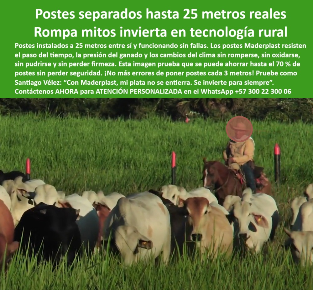 Poste Cercado Poste Perimetral Poste Delimitador Poste Rollizo Fazenda Maderplast poste fuerte para cercas de larga distancia y tensión, - Manejo de praderas con postes separados a gran distancia, - ¿Qué poste usar para reducir costos en cercado rural?, - poste reciclado para cercas extensas de pastoreo rotacional, - poste plástico para delimitar potreros en zona tropical, - poste-ganadero-que-no-se-pudre, - poste que sustituye madera sin pudrirse ni quebrarse, - poste-de-larga-distancia-sin-mantenimiento, - poste ganadero para ahorro en cercas por menor cantidad, - poste plástico para rotación de potreros sin mantenimiento, - poste dieléctrico que resiste presión animal sin deformarse, - Rotación ganadera con postes firmes y duraderos, - poste-plastico-para-rotacion-ganadera-a-25-metros-sin-falla.jpg, - poste-plástico-para-ganado-intensivo, - Postes plásticos instalados a 25 metros entre ganado, - cercas-eficientes-con-menos-postes, - poste-sin-herrumbre-ni-aisladores, - cercas-con-postes-a-25-metros, - poste estructural para separación ganadera con carga intensiva, - División de ganado con postes sólidos y ecológicos, - Poste plástico confiable para rotación intensiva de ganado, - poste-plástico-para-rotación-ganadera, - ¿Qué poste aguanta rotación intensiva sin romperse?, - poste plástico rural resistente a orina fricción y humedad, - poste para ganadería moderna con baja huella de carbono, - ¿Qué tipo de poste funciona sin mantenimiento para ganado?, - poste que funciona a 25 metros entre estacas sin fallos, - poste sin reemplazos constantes en ganadería extensiva, - poste-ecológico-para-sistemas-de-pastoreo, - Postes fuertes delimitando potrero en uso real ganadero, - Cercado de pasto intensivo con postes plásticos reciclados, - Recomendación de poste sin pintura ni óxido para ganadería, - poste seguro para potrero intensivo de engorde bovino, - Postes visibles entre animales en rotación intensiva, - poste ecológico para sistemas silvopastoriles sostenibles, - Cerca ganadera con pocos postes y máxima eficiencia, - ¿Dónde consigo postes que duren más y usen menos estacas?, - Poste que permite separar potreros a 25 metros sin fallos, - poste liviano que soporta alta carga animal sin colapsar, - poste técnico para dividir ganado sin herrumbre ni pintura, - poste fuerte que reduce costos por menor uso de estacas, - ¿Qué poste me sirve para dividir potreros a 25 metros?, - poste de larga vida útil ideal para rotación de praderas, - poste plástico que optimiza inversión en sistemas ganaderos, - poste de polipropileno reciclado ideal para cercas móviles, - ¿Cómo puedo ahorrar postes en cercas ganaderas?, - poste-maderplast-en-finca-de-engorde, - poste-reciclado-para-división-de-potreros, - poste maderplast para pasto mejorado y rotación continua, - Poste para sistemas ganaderos sostenibles con alta durabilidad, - Estacas de plástico para rotación sin pudrición, - poste firme para manejo ganadero sin errores de alineación, - poste confiable para pastoreo de precisión en grandes hatos, - poste duradero para dividir fincas de engorde tecnificado, - Alineación rural con postes Maderplast sin mantenimiento, - poste maderplast fácil de instalar en grandes fincas rurales, - La imagen muestra un potrero intensivo con alta carga ganadera en plena rotación, delimitado con postes plásticos Maderplast instalados a 25 metros entre sí. Estos postes resisten impactos, fricción, humedad y presión del ganado, sin pudrirse, sin oxidarse y sin requerir mantenimiento. El diseño técnico y estructural de Maderplast permite ahorrar hasta un 70 % en estacas, al tiempo que mejora la eficiencia del manejo rural. Maderplast ofrece la solución definitiva para sistemas ganaderos modernos, sostenibles y rentables. Maderplast transforma la inversión ganadera en durabilidad real. 0 cercas-ecológicas-para-rotación, - posteadura-plástica-Villavicencio, - postes-de-alta-durabilidad, - poste antichoque rural, - varas plásticas Poste Poste Cercado Poste Perimetral Poste Delimitador Poste Rollizo Fazenda Maderplast 0 cercas ecológicas para rotación posteadura plástica villavicencio postes de alta durabilidad poste antichoque rural varas plásticas Poste poste fuerte para cercas de larga distancia y tensión, - Manejo de praderas con postes separados a gran distancia, - ¿Qué poste usar para reducir costos en cercado rural?, - poste reciclado para cercas extensas de pastoreo rotacional, - poste plástico para delimitar potreros en zona tropical, - poste-ganadero-que-no-se-pudre, - poste que sustituye madera sin pudrirse ni quebrarse, - poste-de-larga-distancia-sin-mantenimiento, - poste ganadero para ahorro en cercas por menor cantidad, - poste plástico para rotación de potreros sin mantenimiento, - poste dieléctrico que resiste presión animal sin deformarse, - Rotación ganadera con postes firmes y duraderos, - poste-plastico-para-rotacion-ganadera-a-25-metros-sin-falla.jpg, - poste-plástico-para-ganado-intensivo, - Postes plásticos instalados a 25 metros entre ganado, - cercas-eficientes-con-menos-postes, - poste-sin-herrumbre-ni-aisladores, - cercas-con-postes-a-25-metros, - poste estructural para separación ganadera con carga intensiva, - División de ganado con postes sólidos y ecológicos, - Poste plástico confiable para rotación intensiva de ganado, - poste-plástico-para-rotación-ganadera, - ¿Qué poste aguanta rotación intensiva sin romperse?, - poste plástico rural resistente a orina fricción y humedad, - poste para ganadería moderna con baja huella de carbono, - ¿Qué tipo de poste funciona sin mantenimiento para ganado?, - poste que funciona a 25 metros entre estacas sin fallos, - poste sin reemplazos constantes en ganadería extensiva, - poste-ecológico-para-sistemas-de-pastoreo, - Postes fuertes delimitando potrero en uso real ganadero, - Cercado de pasto intensivo con postes plásticos reciclados, - Recomendación de poste sin pintura ni óxido para ganadería, - poste seguro para potrero intensivo de engorde bovino, - Postes visibles entre animales en rotación intensiva, - poste ecológico para sistemas silvopastoriles sostenibles, - Cerca ganadera con pocos postes y máxima eficiencia, - ¿Dónde consigo postes que duren más y usen menos estacas?, - Poste que permite separar potreros a 25 metros sin fallos, - poste liviano que soporta alta carga animal sin colapsar, - poste técnico para dividir ganado sin herrumbre ni pintura, - poste fuerte que reduce costos por menor uso de estacas, - ¿Qué poste me sirve para dividir potreros a 25 metros?, - poste de larga vida útil ideal para rotación de praderas, - poste plástico que optimiza inversión en sistemas ganaderos, - poste de polipropileno reciclado ideal para cercas móviles, - ¿Cómo puedo ahorrar postes en cercas ganaderas?, - poste-maderplast-en-finca-de-engorde, - poste-reciclado-para-división-de-potreros, - poste maderplast para pasto mejorado y rotación continua, - Poste para sistemas ganaderos sostenibles con alta durabilidad, - Estacas de plástico para rotación sin pudrición, - poste firme para manejo ganadero sin errores de alineación, - poste confiable para pastoreo de precisión en grandes hatos, - poste duradero para dividir fincas de engorde tecnificado, - Alineación rural con postes Maderplast sin mantenimiento, - poste maderplast fácil de instalar en grandes fincas rurales, - La imagen muestra un potrero intensivo con alta carga ganadera en plena rotación, delimitado con postes plásticos Maderplast instalados a 25 metros entre sí. Estos postes resisten impactos, fricción, humedad y presión del ganado, sin pudrirse, sin oxidarse y sin requerir mantenimiento. El diseño técnico y estructural de Maderplast permite ahorrar hasta un 70 % en estacas, al tiempo que mejora la eficiencia del manejo rural. Maderplast ofrece la solución definitiva para sistemas ganaderos modernos, sostenibles y rentables. Maderplast transforma la inversión ganadera en durabilidad real. 0 Poste Cercado Poste Perimetral Poste Delimitador Poste Rollizo Fazenda Maderplast 0 cercas-ecológicas-para-rotación, - posteadura-plástica-villavicencio, - postes-de-alta-durabilidad, - poste antichoque rural, - varas plásticas Poste