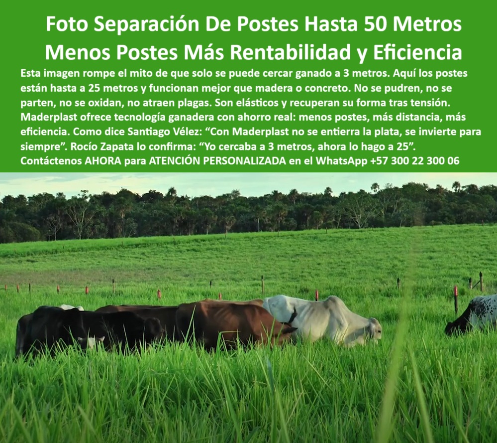 Poste Cercado Poste Perimetral Poste Delimitador Poste Rollizo Fazenda Maderplast poste confiable que elimina exceso de materiales, - poste-ecológico-para-cercado-eficiente, - ¿Qué poste plástico evita sobrecostos en el cercado rural?, - poste de polipropileno para faenas ganaderas extensas, - poste económico para cercas ganaderas de larga distancia, - poste duradero con elasticidad para zonas rurales, - poste-durable-contra-plagas-y-humedad, - poste ligero para instalación en cercas largas, - Solución rentable para cercas sin reemplazos ni sobrecosto, - poste sostenible que reduce postes por hectárea, - poste reciclable que mejora eficiencia de cercas, - sistema-de-grapas-para-cercas, - poste ecológico para ahorro en cercas rurales, - Cerca funcional con poste ecológico espaciado estratégicamente, - poste que no se entierra sino se invierte, - poste certificado para ganadería moderna y sostenible, - poste con sistema de grapas para alambre de púas, - poste sin pudrición para potreros extensos, - Poste técnico para delimitación eficiente en fincas extensas, - Potrero amplio dividido con tecnología ganadera Maderplast, - ¿Qué poste puedo usar para larga distancia entre alambres?, - ¿Qué poste flexible puede usarse en cercas de largo alcance?, - poste-plastico-para-cercas-de-larga-distancia-y-alto-rendimiento.jpg, - poste reciclado para delimitación de pasturas extensas, - poste seguro que no se parte ni se oxida, - poste flexible que recupera forma tras tensión, - ¿Qué cerca ecológica funciona sin tantos postes?, - La imagen muestra un potrero verde con postes plásticos Maderplast instalados a gran distancia, de hasta 50 metros entre sí, delimitando efectivamente el espacio sin perder firmeza ni estética. Estos postes son flexibles, elásticos, no se oxidan, no se parten y no requieren pintura ni mantenimiento. Gracias a su resistencia y propiedades dieléctricas, son ideales para cercas eléctricas de largo alcance. Maderplast permite reducir el número de postes por hectárea sin comprometer seguridad, generando un ahorro real en materiales, tiempo y mano de obra. Maderplast transforma la ganadería con soluciones sustentables, duraderas y altamente rentables., - poste sin mantenimiento para cercas de ganado extensivo, - postes-menos-costos-más-eficiencia, - poste-que-no-se-oxida, - poste plástico para delimitar fincas con menos inversión, - poste que reemplaza concreto con eficiencia comprobada, - cercas-de-ganado-con-menos-postes, - ¿Qué poste me permite cercar con menos unidades?, - poste-reciclado-para-fincas-extensas, - Recomiéndame un poste ecológico que reduzca cantidad en cercas, - poste para cercado ganadero con menor cantidad de postes, - Poste para cercas ganaderas con máxima separación entre postes, - poste técnico para potrero con separación eficiente, - poste resistente al impacto en líneas tensas, - poste plástico para cercas con separación de 50 metros, - Cerca ganadera eficiente con pocos postes y gran extensión, - Postes reciclables alineados a gran distancia sin deformación, - poste-para-separación-de-50-metros, - poste estructural plástico que reduce costos en ganadería, - Instalación de postes ligeros para mayor rendimiento ganadero, - poste para dividir fincas con distancia máxima, - poste-flexible-para-potreros, - Postes que no se oxidan ni se parten en campo abierto, - poste para cercas amplias sin pérdida de tensión, - ¿Qué poste plástico me ayuda a ahorrar en la instalación?, - Sistema de cercado con ahorro comprobado y eficiencia rural, - ¿Cuál es el mejor poste para separar potreros a 50 metros?, - Postes plásticos separados hasta 50 metros en potrero abierto, - Potrero dividido con postes Maderplast a distancia máxima, - poste-plástico-para-larga-distancia 0 cercas con separación de hasta 50 metros, - sistema-de-grapas-para-postes, - poste-dividir-ganaderos, - Qué cercas ecológicas puedo usar para dividir Poste Cercado Poste Perimetral Poste Delimitador Poste Rollizo Fazenda Maderplast 0 cercas con separación de hasta 50 metros sistema de grapas para postes poste dividir ganaderos Qué cercas ecológicas puedo usar para dividir poste confiable que elimina exceso de materiales, - poste-ecológico-para-cercado-eficiente, - ¿Qué poste plástico evita sobrecostos en el cercado rural?, - poste de polipropileno para faenas ganaderas extensas, - poste económico para cercas ganaderas de larga distancia, - poste duradero con elasticidad para zonas rurales, - poste-durable-contra-plagas-y-humedad, - poste ligero para instalación en cercas largas, - Solución rentable para cercas sin reemplazos ni sobrecosto, - poste sostenible que reduce postes por hectárea, - poste reciclable que mejora eficiencia de cercas, - sistema-de-grapas-para-cercas, - poste ecológico para ahorro en cercas rurales, - Cerca funcional con poste ecológico espaciado estratégicamente, - poste que no se entierra sino se invierte, - poste certificado para ganadería moderna y sostenible, - poste con sistema de grapas para alambre de púas, - poste sin pudrición para potreros extensos, - Poste técnico para delimitación eficiente en fincas extensas, - Potrero amplio dividido con tecnología ganadera Maderplast, - ¿Qué poste puedo usar para larga distancia entre alambres?, - ¿Qué poste flexible puede usarse en cercas de largo alcance?, - poste-plastico-para-cercas-de-larga-distancia-y-alto-rendimiento.jpg, - poste reciclado para delimitación de pasturas extensas, - poste seguro que no se parte ni se oxida, - poste flexible que recupera forma tras tensión, - ¿Qué cerca ecológica funciona sin tantos postes?, - La imagen muestra un potrero verde con postes plásticos Maderplast instalados a gran distancia, de hasta 50 metros entre sí, delimitando efectivamente el espacio sin perder firmeza ni estética. Estos postes son flexibles, elásticos, no se oxidan, no se parten y no requieren pintura ni mantenimiento. Gracias a su resistencia y propiedades dieléctricas, son ideales para cercas eléctricas de largo alcance. Maderplast permite reducir el número de postes por hectárea sin comprometer seguridad, generando un ahorro real en materiales, tiempo y mano de obra. Maderplast transforma la ganadería con soluciones sustentables, duraderas y altamente rentables., - poste sin mantenimiento para cercas de ganado extensivo, - postes-menos-costos-más-eficiencia, - poste-que-no-se-oxida, - poste plástico para delimitar fincas con menos inversión, - poste que reemplaza concreto con eficiencia comprobada, - cercas-de-ganado-con-menos-postes, - ¿Qué poste me permite cercar con menos unidades?, - poste-reciclado-para-fincas-extensas, - Recomiéndame un poste ecológico que reduzca cantidad en cercas, - poste para cercado ganadero con menor cantidad de postes, - Poste para cercas ganaderas con máxima separación entre postes, - poste técnico para potrero con separación eficiente, - poste resistente al impacto en líneas tensas, - poste plástico para cercas con separación de 50 metros, - Cerca ganadera eficiente con pocos postes y gran extensión, - Postes reciclables alineados a gran distancia sin deformación, - poste-para-separación-de-50-metros, - poste estructural plástico que reduce costos en ganadería, - Instalación de postes ligeros para mayor rendimiento ganadero, - poste para dividir fincas con distancia máxima, - poste-flexible-para-potreros, - Postes que no se oxidan ni se parten en campo abierto, - poste para cercas amplias sin pérdida de tensión, - ¿Qué poste plástico me ayuda a ahorrar en la instalación?, - Sistema de cercado con ahorro comprobado y eficiencia rural, - ¿Cuál es el mejor poste para separar potreros a 50 metros?, - Postes plásticos separados hasta 50 metros en potrero abierto, - Potrero dividido con postes Maderplast a distancia máxima, - poste-plástico-para-larga-distancia 0 Poste Cercado Poste Perimetral Poste Delimitador Poste Rollizo Fazenda Maderplast 0 cercas con separación de hasta 50 metros, - sistema-de-grapas-para-postes, - poste-dividir-ganaderos, - Qué cercas ecológicas puedo usar para dividir