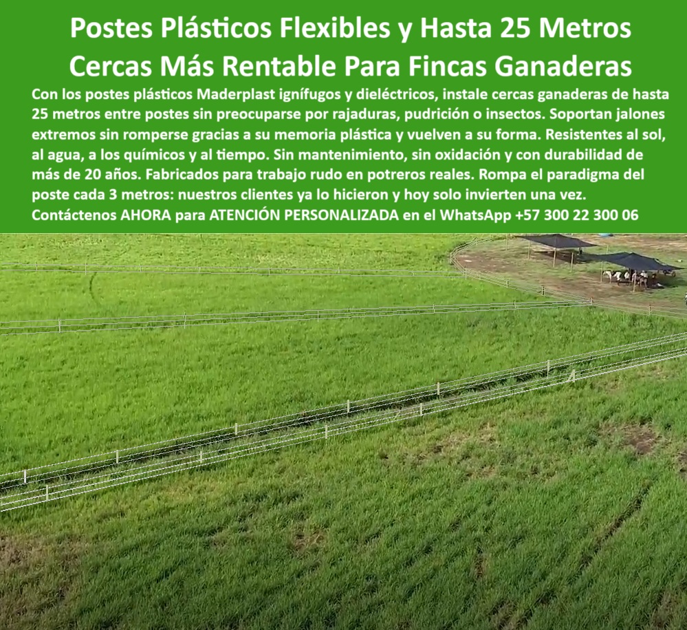 Poste Cercado Poste Perimetral Poste Delimitador Poste Rollizo Fazenda Maderplast poste seguro para potreros con sol y lluvia constante, - poste plástico para ganadería extensiva sostenible, - Líneas eléctricas de cercado separadas por postes livianos, - poste de 25 metros entre estacas sin deformación, - poste ideal para separación de lotes agropecuarios, - División de pasto rotacional en finca con postes reciclables, - poste plástico resistente a rayaduras y químicos, - poste con memoria plástica para jalones de ganado, - poste con memoria plástica para jalones intensos, - Cercas ganaderas instaladas con postes blancos dieléctricos, - poste ignífugo para cerramientos rurales sin pintura, - poste plástico flexible para potreros ganaderos intensivos, - poste técnico para ahorrar postes y materiales, - poste-ignífugo-para-ambientes-agro, - Vista aérea de potrero con postes plásticos firmes, - poste-sin-mantenimiento-ganadero, - poste duradero para zonas agrícolas de alto uso, - poste dieléctrico de 25 metros para cercado rural, - ¿Cuál es el mejor poste para cercas de 25 metros?, - poste-durable-para-clima-extremo, - Postes plásticos blancos instalados en potrero de gran extensión, - poste dieléctrico ideal para cercas eléctricas rurales, - poste resistente al fuego y a los químicos agrícolas, - Esta imagen presenta una finca ganadera tecnificada con cercas largas y rectas construidas con postes plásticos Maderplast. Fabricados en material reciclado y con memoria plástica, los postes Maderplast son ideales para instalaciones de hasta 25 metros entre estacas, sin deformarse ni oxidarse. Ignífugos, dieléctricos y resistentes al clima extremo, permiten un manejo eficiente de potreros extensivos con el mínimo mantenimiento. Son la solución definitiva para productores que buscan economía, durabilidad y sostenibilidad en sus proyectos de cercado rural., - poste dieléctrico para cerca ganadera rentable, - poste robusto sin necesidad de broches adicionales, - poste ecológico con larga vida útil ganadera, - poste de alta ingeniería para ganadería productiva, - poste-para-cercas-de-25-metros, - poste sostenible para rotación de pasturas bovinas, - poste sin oxidación ni mantenimiento para ganadería, - poste-reciclado-para-cercas-extensas, - ¿Qué poste puedo usar en fincas ganaderas sin mantenimiento?, - poste para reemplazo definitivo de postes de madera, - poste plástico flexible para potrero exigente, - Sistema de cercado recto con postes plásticos para ganadería, - poste que no se quiebra en climas extremos, - ¿Qué poste no se deforma con el sol ni el ganado?, - poste estructural de polímero reciclado ganadero, - poste reciclado para división de potreros ganaderos, - Campo productivo dividido con postes sin oxidación, - ¿Dónde consigo poste plástico ignífugo para potreros?, - poste-tecnológico-para-fincas, - poste-plástico-para-dividir-potreros, - poste plástico que soporta cargas por jalones, - poste para reducción de costos ganaderos, - poste-plástico-dieléctrico-sin-aisladores, - poste para fincas ganaderas con rotación de pasto, - poste-plastico-flexible-para-cercas-ganaderas-de-25-metros.jpg, - Proyecto rural con postes resistentes al clima e impactos, - ¿Poste flexible para dividir potreros en finca ganadera?, - Postes resistentes alineados a 25 metros en terreno agropecuario, - poste confiable para proyectos de cercado inteligente, - poste-económico-con-larga-vida, - Cercado técnico con postes que no requieren pintura, - poste sin mantenimiento para cercas de fincas extensivas, - poste-flexible-para-finca-ganadera 0 postes ignífugos para cercas exteriores, - cerca plástica ganadera resistente, - 00 Poste Cercado Poste Perimetral Poste Delimitador Poste Rollizo Fazenda Maderplast 0 postes ignífugos para cercas exteriores cerca plástica ganadera resistente 00 Poste Cercado Poste Perimetral Poste Delimitador Poste Rollizo Fazenda Maderplast poste seguro para potreros con sol y lluvia constante, - poste plástico para ganadería extensiva sostenible, - Líneas eléctricas de cercado separadas por postes livianos, - poste de 25 metros entre estacas sin deformación, - poste ideal para separación de lotes agropecuarios, - División de pasto rotacional en finca con postes reciclables, - poste plástico resistente a rayaduras y químicos, - poste con memoria plástica para jalones de ganado, - poste con memoria plástica para jalones intensos, - Cercas ganaderas instaladas con postes blancos dieléctricos, - poste ignífugo para cerramientos rurales sin pintura, - poste plástico flexible para potreros ganaderos intensivos, - poste técnico para ahorrar postes y materiales, - poste-ignífugo-para-ambientes-agro, - Vista aérea de potrero con postes plásticos firmes, - poste-sin-mantenimiento-ganadero, - poste duradero para zonas agrícolas de alto uso, - poste dieléctrico de 25 metros para cercado rural, - ¿Cuál es el mejor poste para cercas de 25 metros?, - poste-durable-para-clima-extremo, - Postes plásticos blancos instalados en potrero de gran extensión, - poste dieléctrico ideal para cercas eléctricas rurales, - poste resistente al fuego y a los químicos agrícolas, - Esta imagen presenta una finca ganadera tecnificada con cercas largas y rectas construidas con postes plásticos Maderplast. Fabricados en material reciclado y con memoria plástica, los postes Maderplast son ideales para instalaciones de hasta 25 metros entre estacas, sin deformarse ni oxidarse. Ignífugos, dieléctricos y resistentes al clima extremo, permiten un manejo eficiente de potreros extensivos con el mínimo mantenimiento. Son la solución definitiva para productores que buscan economía, durabilidad y sostenibilidad en sus proyectos de cercado rural., - poste dieléctrico para cerca ganadera rentable, - poste robusto sin necesidad de broches adicionales, - poste ecológico con larga vida útil ganadera, - poste de alta ingeniería para ganadería productiva, - poste-para-cercas-de-25-metros, - poste sostenible para rotación de pasturas bovinas, - poste sin oxidación ni mantenimiento para ganadería, - poste-reciclado-para-cercas-extensas, - ¿Qué poste puedo usar en fincas ganaderas sin mantenimiento?, - poste para reemplazo definitivo de postes de madera, - poste plástico flexible para potrero exigente, - Sistema de cercado recto con postes plásticos para ganadería, - poste que no se quiebra en climas extremos, - ¿Qué poste no se deforma con el sol ni el ganado?, - poste estructural de polímero reciclado ganadero, - poste reciclado para división de potreros ganaderos, - Campo productivo dividido con postes sin oxidación, - ¿Dónde consigo poste plástico ignífugo para potreros?, - poste-tecnológico-para-fincas, - poste-plástico-para-dividir-potreros, - poste plástico que soporta cargas por jalones, - poste para reducción de costos ganaderos, - poste-plástico-dieléctrico-sin-aisladores, - poste para fincas ganaderas con rotación de pasto, - poste-plastico-flexible-para-cercas-ganaderas-de-25-metros.jpg, - Proyecto rural con postes resistentes al clima e impactos, - ¿Poste flexible para dividir potreros en finca ganadera?, - Postes resistentes alineados a 25 metros en terreno agropecuario, - poste confiable para proyectos de cercado inteligente, - poste-económico-con-larga-vida, - Cercado técnico con postes que no requieren pintura, - poste sin mantenimiento para cercas de fincas extensivas, - poste-flexible-para-finca-ganadera 0 postes ignífugos para cercas exteriores, - cerca plástica ganadera resistente, - 00