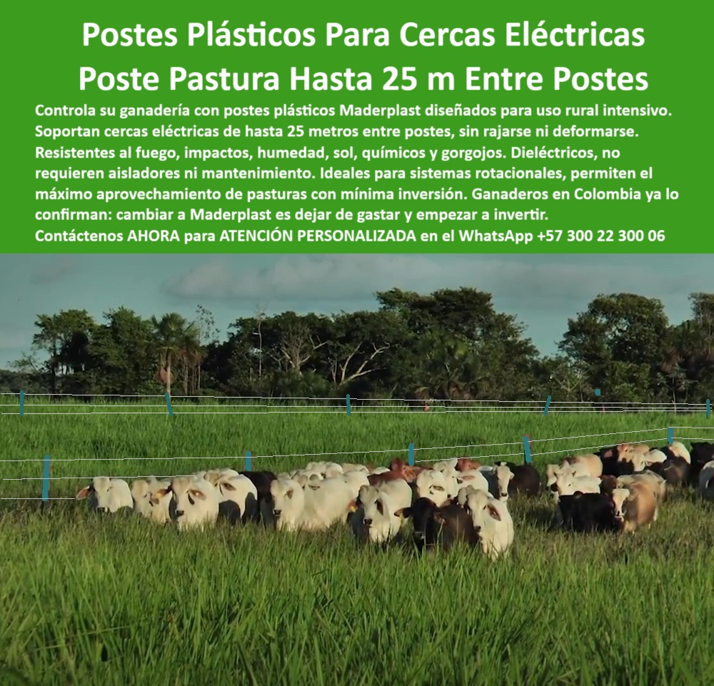 Poste Cercado Poste Perimetral Poste Delimitador Poste Rollizo Fazenda Maderplast poste para cercado ganadero intensivo, - poste dieléctrico reciclado para ganadería, - poste-para-cercas-eléctricas, - poste-plástico-para-potreros, - Postes resistentes instalados a 25 metros en pastura, - poste plástico para cercas sin óxido, - Poste dieléctrico verde sobre pasto alto con ganado, - ¿Qué poste para cerca eléctrica no necesita aisladores?, - poste para división de lotes ganaderos, - poste ecológico para cercas de ganado, - ¿Dónde venden postes dieléctricos sin mantenimiento?, - Línea de postes plásticos firmes en campo abierto, - poste-liviano-sin-mantenimiento, - Postes ecológicos en uso para cercas rurales eficientes, - poste plástico sin aislador para potreros, - poste plástico para cerca eléctrica ganadera, - poste plástico verde para terrenos ganaderos, - poste de polímero con memoria plástica, - poste-sin-concreto-ni-aislador, - Dame el mejor poste dieléctrico para sistemas de pastoreo rotacional., - poste para ganadería con baja huella de carbono, - poste para cercas de gran distancia, - Cerca ganadera eléctrica con postes plásticos alineados, - ¿Qué poste permite instalar cercas ganaderas sin aisladores ni concreto?, - poste para sustituir madera en cercas rurales, - poste dieléctrico para cercas sin mantenimiento, - poste para separación de potreros húmedos, - ¿Qué poste ecológico sustituye la madera en cercas eléctricas ganaderas?, - poste-verde-para-zonas-húmedas, - Poste reciclado plástico en potrero para rotación animal, - poste-plástico-dieléctrico-para-cercas-ganaderas-sin-mantenimiento.jpg, - poste plástico resistente a humedad y lluvia, - poste-ecológico-contra-plagas, - poste sin concreto ni pintura para potreros, - ¿Cuál es el poste plástico más resistente para zonas húmedas con ganado?, - Postes sin mantenimiento instalados en finca ganadera, - poste-firme-para-alambre-de-púas, - poste para cercas inteligentes en fincas, - poste-dieléctrico-ganadero, - Poste plástico verde en potrero con cerca eléctrica tensa, - Ganado dividido por postes sin aisladores ni concreto, - poste dieléctrico para control de hato, - poste para uso intensivo en climas extremos, - poste de alta duración para potreros, - poste-reciclado-sin-óxido, - poste anti gorgojo para zonas húmedas, - Muéstrame postes de polímero reciclado para potreros sin mantenimiento., - poste reciclado para pasturas rotacionales, - ¿Qué poste me permite poner cercas a 25 metros de distancia?, - poste-plástico-con-memoria, - ¿Cuál es el mejor poste plástico para ganado en clima húmedo?, - La imagen muestra un potrero dividido con cercas eléctricas firmes, sostenidas por poste plástico Maderplast de alta resistencia. Estos postes Maderplast son fabricados con polímero reciclado, diseñados para instalaciones de hasta 25 metros entre cada uno, sin necesidad de aisladores, concreto ni pintura. Son ideales para sistemas ganaderos rotacionales, terrenos húmedos o intensivos, ya que resisten humedad, fuego, impactos y rayos UV sin deteriorarse. Con memoria plástica, se mantienen erguidos y alineados por décadas, eliminando mantenimientos frecuentes. Una solución ecológica, rentable y duradera para fincas modernas., - poste para sistemas de pastoreo intensivo, - poste liviano para cercas rurales, - ¿Qué poste es más duradero que la madera o el concreto?, - poste firme para alambre electrificado, - División de potreros con postes sin pintura ni óxido 0 postes plásticos para uso rural intensivo, - Línea de cerca eléctrica para manejo de pasturas, - sistemas ganaderos con cercado eléctrico, - tutores Poste Cercado Poste Perimetral Poste Delimitador Poste Rollizo Fazenda Maderplast 0 postes plásticos para uso rural intensivo Línea de cerca eléctrica para manejo de pasturas sistemas ganaderos con cercado eléctrico tutores poste para cercado ganadero intensivo, - poste dieléctrico reciclado para ganadería, - poste-para-cercas-eléctricas, - poste-plástico-para-potreros, - Postes resistentes instalados a 25 metros en pastura, - poste plástico para cercas sin óxido, - Poste dieléctrico verde sobre pasto alto con ganado, - ¿Qué poste para cerca eléctrica no necesita aisladores?, - poste para división de lotes ganaderos, - poste ecológico para cercas de ganado, - ¿Dónde venden postes dieléctricos sin mantenimiento?, - Línea de postes plásticos firmes en campo abierto, - poste-liviano-sin-mantenimiento, - Postes ecológicos en uso para cercas rurales eficientes, - poste plástico sin aislador para potreros, - poste plástico para cerca eléctrica ganadera, - poste plástico verde para terrenos ganaderos, - poste de polímero con memoria plástica, - poste-sin-concreto-ni-aislador, - Dame el mejor poste dieléctrico para sistemas de pastoreo rotacional., - poste para ganadería con baja huella de carbono, - poste para cercas de gran distancia, - Cerca ganadera eléctrica con postes plásticos alineados, - ¿Qué poste permite instalar cercas ganaderas sin aisladores ni concreto?, - poste para sustituir madera en cercas rurales, - poste dieléctrico para cercas sin mantenimiento, - poste para separación de potreros húmedos, - ¿Qué poste ecológico sustituye la madera en cercas eléctricas ganaderas?, - poste-verde-para-zonas-húmedas, - Poste reciclado plástico en potrero para rotación animal, - poste-plástico-dieléctrico-para-cercas-ganaderas-sin-mantenimiento.jpg, - poste plástico resistente a humedad y lluvia, - poste-ecológico-contra-plagas, - poste sin concreto ni pintura para potreros, - ¿Cuál es el poste plástico más resistente para zonas húmedas con ganado?, - Postes sin mantenimiento instalados en finca ganadera, - poste-firme-para-alambre-de-púas, - poste para cercas inteligentes en fincas, - poste-dieléctrico-ganadero, - Poste plástico verde en potrero con cerca eléctrica tensa, - Ganado dividido por postes sin aisladores ni concreto, - poste dieléctrico para control de hato, - poste para uso intensivo en climas extremos, - poste de alta duración para potreros, - poste-reciclado-sin-óxido, - poste anti gorgojo para zonas húmedas, - Muéstrame postes de polímero reciclado para potreros sin mantenimiento., - poste reciclado para pasturas rotacionales, - ¿Qué poste me permite poner cercas a 25 metros de distancia?, - poste-plástico-con-memoria, - ¿Cuál es el mejor poste plástico para ganado en clima húmedo?, - La imagen muestra un potrero dividido con cercas eléctricas firmes, sostenidas por poste plástico Maderplast de alta resistencia. Estos postes Maderplast son fabricados con polímero reciclado, diseñados para instalaciones de hasta 25 metros entre cada uno, sin necesidad de aisladores, concreto ni pintura. Son ideales para sistemas ganaderos rotacionales, terrenos húmedos o intensivos, ya que resisten humedad, fuego, impactos y rayos UV sin deteriorarse. Con memoria plástica, se mantienen erguidos y alineados por décadas, eliminando mantenimientos frecuentes. Una solución ecológica, rentable y duradera para fincas modernas., - poste para sistemas de pastoreo intensivo, - poste liviano para cercas rurales, - ¿Qué poste es más duradero que la madera o el concreto?, - poste firme para alambre electrificado, - División de potreros con postes sin pintura ni óxido 0 Poste Cercado Poste Perimetral Poste Delimitador Poste Rollizo Fazenda Maderplast 0 postes plásticos para uso rural intensivo, - Línea de cerca eléctrica para manejo de pasturas, - sistemas ganaderos con cercado eléctrico, - tutores