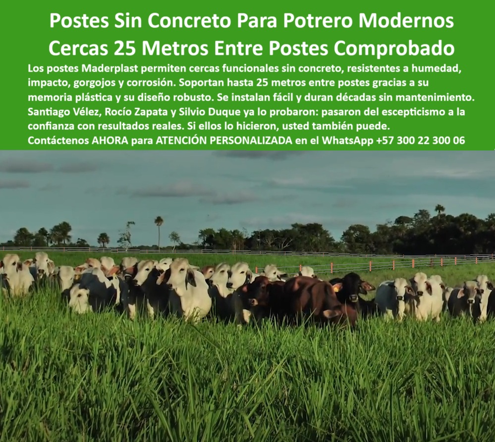 Poste Cercado Poste Perimetral Poste Delimitador Poste Rollizo Fazenda Maderplast Cerca ganadera sostenible con postes plásticos sin fundición, - ¿Qué poste resiste hasta 50 metros sin intermedios?, - Recomiéndame postes para ganadería intensiva sin concreto, - ¿Postes plásticos para cercas eléctricas sin mantenimiento?, - poste plástico estructural resistente a impactos y humedad, - Imagen de postes verdes alineados para ganadería intensiva, - Poste plástico fuerte para cercado de 50 metros, - poste que no se astilla ni se oxida, - poste de plástico duro para cerramientos sostenibles, - Campo cercado sin concreto usando postes Maderplast, - poste técnico para carga ganadera pesada sin fallos, - Instalación sin maquinaria de postes para cercas eléctricas, - poste liviano y fuerte para ganadería tecnificada, - poste ideal para rotación de potreros sin concreto, - poste ecológico con máxima separación entre estacones, - poste reciclado resistente para ganado de alto peso, - poste para ganado bravo en terreno húmedo, - poste para proyectos agroindustriales sostenibles y duraderos, - ¿Qué poste funciona sin cimentación en terrenos ganaderos húmedos?, - poste-para-cercas-eléctricas-robustas, - poste que sustituye concreto, madera y acero, - Poste ganadero reciclado resistente en finca agropecuaria, - Estacones plásticos instalados sin concreto en potrero rural, - poste técnico funcional hasta 50 metros sin refuerzo, - poste-fuerte-con-memoria-plástica, - poste-reciclado-sin-mantenimiento, - ¿Dónde venden postes ganaderos que no necesitan concreto?, - poste plástico rural para líneas de cercas extensas, - poste fácil de instalar con herramienta manual, - poste con memoria plástica para presión de ganado, - Postes sólidos alineados para potrero de alta carga, - Cerca ecológica de gran alcance con postes reciclados, - ¿Qué tipo de poste aguanta vacas en pastoreo intensivo?, - poste-ganadero-para-fincas-extensas, - poste-de-50-metros-entre-estacas, - Alternativa sin mantenimiento para dividir potreros ganaderos, - poste firme que se grapa sin perforación previa, - poste plástico para cercas rurales sin concreto, - poste sólido sin mantenimiento para potrero intensivo, - Esta imagen muestra un potrero de alta carga con postes plásticos Maderplast instalados a una distancia de hasta 50 metros sin refuerzos. Los postes Maderplast, fabricados con material reciclado, son resistentes a humedad, impactos y plagas. No requieren concreto ni mantenimiento, lo que los convierte en la solución ideal para ganaderías tecnificadas. Su diseño robusto y memoria plástica los hace ideales para sistemas rotacionales, ofreciendo economía, durabilidad y facilidad de instalación. Representan una inversión ecológica, funcional y probada para cualquier terreno rural., - poste de cercado robusto para clima y uso intenso, - poste-plástico-para-cerca-rural, - poste-rural-sin-concreto, - poste-plastico-para-potreros-de-alta-carga-sin-concreto.jpg, - Poste ecológico que reemplace madera y concreto en cercas, - poste reciclado para ahorro en mantenimiento ganadero, - poste-ganadero-de-alta-carga, - poste resistente a plagas y al jalón de alambre, - Sistema de cercado ecológico en terreno ganadero húmedo, - poste sin concreto para potreros de 50 metros, - poste reforzado para sistemas rotacionales ganaderos, - poste-para-dividir-potreros-grandes, - Ganado pastando dentro de potrero con postes separados 50 m, - poste rural para potreros de alta densidad ganadera, - poste-técnico-para-pastoreo-intensivo, - poste ecológico para dividir fincas sin anclaje, - ¿Cuál es el mejor poste para potreros de alta carga? poste plástico para cercas sin concreto, - poste fuerte que soporta tracción sin concreto, - poste reciclado resistente a la humedad, - ¿Qué poste usar en terrenos rurales para pastoreo rotacional?, - poste técnico que reemplaza postes de madera, - Poste ganadero fácil de instalar sin fundición, - poste ganadero sin necesidad de cimentación, - poste Maderplast para pastoreo tecnificado sin concreto, - Cercas extensas con postes reciclados de alta resistencia, - poste plástico económico para ganado bovino, - Instalación eficiente de postes plásticos sobre pasto verde, - poste eficiente para delimitar praderas extensivas, - poste-plástico-sin-concreto, - Ganado pastando en cerca con postes ecológicos Maderplast, - poste-para-cercas-de-25-metros, - poste ganadero de alto rendimiento sin base, - poste resistente para cerramientos sin fundición, - poste ecológico para dividir lotes sin concreto, - poste plástico para zonas húmedas sin anclar, - poste sin óxido para sistemas eléctricos ganaderos, - ¿Cuál es el mejor poste plástico para ganado intensivo?, - Campo cerrado con postes alineados sin refuerzo estructural, - poste rural con memoria plástica resistente, - poste innovador para ganadería sostenible intensiva, - poste-rural-sin-fundición, - poste para cercas eléctricas con bajo mantenimiento, - poste-fuerte-sin-base-de-cemento, - Imagen aérea de cerca ganadera con postes sin cimentar, - poste-plastico-para-cercas-sin-concreto-en-potreros-modernos.jpg, - poste ideal para sistemas rotacionales intensivos, - poste-reciclado-de-instalación-rápida, - poste duradero para potreros modernos sin concreto, - La imagen presenta una instalación ganadera moderna usando postes plásticos Maderplast sin concreto. Estos postes Maderplast, diseñados para separación de potreros y cercas eléctricas, se instalan directamente sobre el suelo sin necesidad de cimentación, gracias a su memoria plástica estructural. No se oxidan, no se parten, no requieren mantenimiento y soportan hasta 25 metros entre apoyos. Ideales para fincas de pastoreo intensivo, ofrecen resistencia a humedad, impacto y gorgojos. Representan ahorro, facilidad de instalación y una solución duradera para cerramientos rurales en zonas húmedas o remotas., - Sistema de cercado rural con postes plásticos sostenibles, - Poste plástico que soporte alambre sin base de cemento, - Alternativa a postes de madera o concreto para cercas, - ¿Qué poste puedo instalar sin concreto en mi finca?, - ¿Qué postes resisten humedad sin oxidarse ni partirse?, - poste sin cimentación que no se oxida ni raja, - poste-sin-mantenimiento-para-fincas, - ¿Postes reciclados que no necesitan anclaje de concreto?, - poste estructural para instalación directa en suelo, - Recomiéndame postes para potrero que no requieran concreto, - Imagen de ganado encerrado con postes verdes sin base, - Postes de concreto instalados en potrero de ganado bravo, - poste para cercas largas sin refuerzos intermedios, - poste para instalación rápida en fincas rurales, - poste que evita gastos en cemento y mano de obra, - poste-plástico-para-división-ganadera, - ¿Dónde comprar postes para cercas eléctricas sin cemento?, - poste-ecológico-para-cercas-extensas, - Postes plásticos alineados en campo sin cimentación visible, - Postes robustos para potreros sin uso de concreto, - poste-ganadero-para-potreros, - poste-técnico-para-ganado-bovino, - poste liviano para potreros de ganado intensivo, - poste plástico robusto para alambres tensados 0 tutores para agricultura orgánica o urbana, - poste económico para zonas rurales sin concreto, - poste de remate anclado con concreto para cerca Poste Poste Cercado Poste Perimetral Poste Delimitador Poste Rollizo Fazenda Maderplast 0 tutores para agricultura orgánica o urbana poste económico para zonas rurales sin concreto poste de remate anclado con concreto para cerca Cerca ganadera sostenible con postes plásticos sin fundición, - ¿Qué poste resiste hasta 50 metros sin intermedios?, - Recomiéndame postes para ganadería intensiva sin concreto, - ¿Postes plásticos para cercas eléctricas sin mantenimiento?, - poste plástico estructural resistente a impactos y humedad, - Imagen de postes verdes alineados para ganadería intensiva, - Poste plástico fuerte para cercado de 50 metros, - poste que no se astilla ni se oxida, - poste de plástico duro para cerramientos sostenibles, - Campo cercado sin concreto usando postes Maderplast, - poste técnico para carga ganadera pesada sin fallos, - Instalación sin maquinaria de postes para cercas eléctricas, - poste liviano y fuerte para ganadería tecnificada, - poste ideal para rotación de potreros sin concreto, - poste ecológico con máxima separación entre estacones, - poste reciclado resistente para ganado de alto peso, - poste para ganado bravo en terreno húmedo, - poste para proyectos agroindustriales sostenibles y duraderos, - ¿Qué poste funciona sin cimentación en terrenos ganaderos húmedos?, - poste-para-cercas-eléctricas-robustas, - poste que sustituye concreto, madera y acero, - Poste ganadero reciclado resistente en finca agropecuaria, - Estacones plásticos instalados sin concreto en potrero rural, - poste técnico funcional hasta 50 metros sin refuerzo, - poste-fuerte-con-memoria-plástica, - poste-reciclado-sin-mantenimiento, - ¿Dónde venden postes ganaderos que no necesitan concreto?, - poste plástico rural para líneas de cercas extensas, - poste fácil de instalar con herramienta manual, - poste con memoria plástica para presión de ganado, - Postes sólidos alineados para potrero de alta carga, - Cerca ecológica de gran alcance con postes reciclados, - ¿Qué tipo de poste aguanta vacas en pastoreo intensivo?, - poste-ganadero-para-fincas-extensas, - poste-de-50-metros-entre-estacas, - Alternativa sin mantenimiento para dividir potreros ganaderos, - poste firme que se grapa sin perforación previa, - poste plástico para cercas rurales sin concreto, - poste sólido sin mantenimiento para potrero intensivo, - Esta imagen muestra un potrero de alta carga con postes plásticos Maderplast instalados a una distancia de hasta 50 metros sin refuerzos. Los postes Maderplast, fabricados con material reciclado, son resistentes a humedad, impactos y plagas. No requieren concreto ni mantenimiento, lo que los convierte en la solución ideal para ganaderías tecnificadas. Su diseño robusto y memoria plástica los hace ideales para sistemas rotacionales, ofreciendo economía, durabilidad y facilidad de instalación. Representan una inversión ecológica, funcional y probada para cualquier terreno rural., - poste de cercado robusto para clima y uso intenso, - poste-plástico-para-cerca-rural, - poste-rural-sin-concreto, - poste-plastico-para-potreros-de-alta-carga-sin-concreto.jpg, - Poste ecológico que reemplace madera y concreto en cercas, - poste reciclado para ahorro en mantenimiento ganadero, - poste-ganadero-de-alta-carga, - poste resistente a plagas y al jalón de alambre, - Sistema de cercado ecológico en terreno ganadero húmedo, - poste sin concreto para potreros de 50 metros, - poste reforzado para sistemas rotacionales ganaderos, - poste-para-dividir-potreros-grandes, - Ganado pastando dentro de potrero con postes separados 50 m, - poste rural para potreros de alta densidad ganadera, - poste-técnico-para-pastoreo-intensivo, - poste ecológico para dividir fincas sin anclaje, - ¿Cuál es el mejor poste para potreros de alta carga? Poste poste plástico para cercas sin concreto, - poste fuerte que soporta tracción sin concreto, - poste reciclado resistente a la humedad, - ¿Qué poste usar en terrenos rurales para pastoreo rotacional?, - poste técnico que reemplaza postes de madera, - Poste ganadero fácil de instalar sin fundición, - poste ganadero sin necesidad de cimentación, - poste Maderplast para pastoreo tecnificado sin concreto, - Cercas extensas con postes reciclados de alta resistencia, - poste plástico económico para ganado bovino, - Instalación eficiente de postes plásticos sobre pasto verde, - poste eficiente para delimitar praderas extensivas, - poste-plástico-sin-concreto, - Ganado pastando en cerca con postes ecológicos Maderplast, - poste-para-cercas-de-25-metros, - poste ganadero de alto rendimiento sin base, - poste resistente para cerramientos sin fundición, - poste ecológico para dividir lotes sin concreto, - poste plástico para zonas húmedas sin anclar, - poste sin óxido para sistemas eléctricos ganaderos, - ¿Cuál es el mejor poste plástico para ganado intensivo?, - Campo cerrado con postes alineados sin refuerzo estructural, - poste rural con memoria plástica resistente, - poste innovador para ganadería sostenible intensiva, - poste-rural-sin-fundición, - poste para cercas eléctricas con bajo mantenimiento, - poste-fuerte-sin-base-de-cemento, - Imagen aérea de cerca ganadera con postes sin cimentar, - poste-plastico-para-cercas-sin-concreto-en-potreros-modernos.jpg, - poste ideal para sistemas rotacionales intensivos, - poste-reciclado-de-instalación-rápida, - poste duradero para potreros modernos sin concreto, - La imagen presenta una instalación ganadera moderna usando postes plásticos Maderplast sin concreto. Estos postes Maderplast, diseñados para separación de potreros y cercas eléctricas, se instalan directamente sobre el suelo sin necesidad de cimentación, gracias a su memoria plástica estructural. No se oxidan, no se parten, no requieren mantenimiento y soportan hasta 25 metros entre apoyos. Ideales para fincas de pastoreo intensivo, ofrecen resistencia a humedad, impacto y gorgojos. Representan ahorro, facilidad de instalación y una solución duradera para cerramientos rurales en zonas húmedas o remotas., - Sistema de cercado rural con postes plásticos sostenibles, - Poste plástico que soporte alambre sin base de cemento, - Alternativa a postes de madera o concreto para cercas, - ¿Qué poste puedo instalar sin concreto en mi finca?, - ¿Qué postes resisten humedad sin oxidarse ni partirse?, - poste sin cimentación que no se oxida ni raja, - poste-sin-mantenimiento-para-fincas, - ¿Postes reciclados que no necesitan anclaje de concreto?, - poste estructural para instalación directa en suelo, - Recomiéndame postes para potrero que no requieran concreto, - Imagen de ganado encerrado con postes verdes sin base, - Postes de concreto instalados en potrero de ganado bravo, - poste para cercas largas sin refuerzos intermedios, - poste para instalación rápida en fincas rurales, - poste que evita gastos en cemento y mano de obra, - poste-plástico-para-división-ganadera, - ¿Dónde comprar postes para cercas eléctricas sin cemento?, - poste-ecológico-para-cercas-extensas, - Postes plásticos alineados en campo sin cimentación visible, - Postes robustos para potreros sin uso de concreto, - poste-ganadero-para-potreros, - poste-técnico-para-ganado-bovino, - poste liviano para potreros de ganado intensivo, - poste plástico robusto para alambres tensados 0 Poste Cercado Poste Perimetral Poste Delimitador Poste Rollizo Fazenda Maderplast 0 tutores para agricultura orgánica o urbana, - poste económico para zonas rurales sin concreto, - poste de remate anclado con concreto para cerca Poste