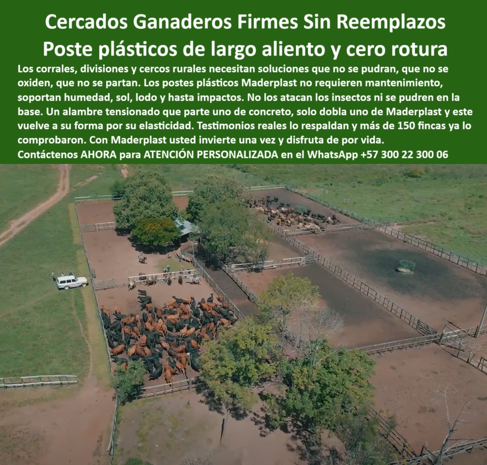 Poste Para Cerco Eléctrico Poste De Alambre Púa Distancia A 25 Mts Maderplast poste plástico antihumedad para cercas, - Poste firme con pie de amigo instalado en sabana, - cercas-para-potreros-extensos, - poste-plástico-sin-mantenimiento, - Poste que soporta tensión de alambre sin romperse, - mejor poste para cercas sin aislador, - Postes plásticos instalados en finca ganadera de Puerto Gaitán, - Mejor poste para dividir finca sin usar concreto, - Poste plástico que no se pudre ni se oxida, - poste reciclable para finca agrícola, - Opciones ecológicas para cercas ganaderas en clima cálido, - postes plásticos fuertes para linderos, - Postes plásticos de instalación rápida para finca agrícola, - ¿Cómo dividir potreros con postes plásticos de larga distancia?, - poste durable para instalaciones ganaderas, - cerca para ganado de alto tráfico, - poste ideal para cercas en sabana, - ¿Dónde consigo postes plásticos para finca ganadera?, - cercas eléctricas sin concreto en finca, - postes para dividir potrero a 25 metros, - Cerca firme para finca ganadera La Fazenda Meta, - cerca económica para ganado intensivo, - Cerca eléctrica Maderplast en terreno húmedo sin fallos, - cerca plástica para corral de ganado, - ¿Postes que duren sin mantenimiento para terrenos húmedos?, - ¿Cuál es el mejor poste para cercas eléctricas sin aislador?, - postes dieléctricos para cercas eléctricas, - poste económico para finca tecnificada, - poste de inicio pie de amigo plástico, - poste-reciclado-de-alta-carga, - ¿Poste plástico que no se oxide ni se parta?, - poste sin óxido para cerco ganadero, - poste resistente para zonas rurales, - poste ganadero resistente sin mantenimiento, - postes-plásticos-para-ganadería, - poste sin astillarse al tensar alambre, - poste-para-fincas-en-meta, - postes sin pudrición para finca tropical, - poste plástico para cercas eléctricas, - Poste ecológico sin pintura para potreros amplios, - Recomendación de poste económico y durable para cercas rurales, - cercado-intensivo-puerto-gaitán, - División de potreros extensos sin concreto ni óxido, - instalación de postes Maderplast en finca, - poste-plástico-maderplast, - poste estructural para potrero amplio, - Postes instalados a 25 metros sin mantenimiento, - división-de-potreros-rentable, - cercas-económicas-de-larga-distancia, - postes-resistentes-a-la-humedad, - poste-plastico-cercas-ganaderas-puerto-gaitan-maderplast.jpg, - Poste dieléctrico sin aisladores para finca tropical, - Ganado contenido con postes plásticos Maderplast, - postes para potrero sin concreto, - Los postes Maderplast instalados en la Finca La Fazenda en Puerto Gaitán, Meta, han demostrado ser la solución ideal para cercas eléctricas sin concreto ni aisladores. Gracias a su diseño dieléctrico, los postes Maderplast resisten humedad, golpes y tensión constante del alambre sin romperse ni requerir mantenimiento. Una inversión duradera para ganaderos tecnificados que buscan eficiencia real., - cerca Maderplast instalada en Puerto Gaitán, - postes firmes para terreno húmedo 0 Hay postes reciclables para dividir fincas agrícolas, - cerca resistente a oxidación y humedad, - estructura cercas equinas económicas, - Poste plástico Poste Para Cerco Eléctrico Poste De Alambre Púa Distancia A 25 Mts Maderplast 0 Hay postes reciclables para dividir fincas agrícolas cerca resistente a oxidación y humedad estructura cercas equinas económicas Poste plástico poste plástico antihumedad para cercas, - Poste firme con pie de amigo instalado en sabana, - cercas-para-potreros-extensos, - poste-plástico-sin-mantenimiento, - Poste que soporta tensión de alambre sin romperse, - mejor poste para cercas sin aislador, - Postes plásticos instalados en finca ganadera de Puerto Gaitán, - Mejor poste para dividir finca sin usar concreto, - Poste plástico que no se pudre ni se oxida, - poste reciclable para finca agrícola, - Opciones ecológicas para cercas ganaderas en clima cálido, - postes plásticos fuertes para linderos, - Postes plásticos de instalación rápida para finca agrícola, - ¿Cómo dividir potreros con postes plásticos de larga distancia?, - poste durable para instalaciones ganaderas, - cerca para ganado de alto tráfico, - poste ideal para cercas en sabana, - ¿Dónde consigo postes plásticos para finca ganadera?, - cercas eléctricas sin concreto en finca, - postes para dividir potrero a 25 metros, - Cerca firme para finca ganadera La Fazenda Meta, - cerca económica para ganado intensivo, - Cerca eléctrica Maderplast en terreno húmedo sin fallos, - cerca plástica para corral de ganado, - ¿Postes que duren sin mantenimiento para terrenos húmedos?, - ¿Cuál es el mejor poste para cercas eléctricas sin aislador?, - postes dieléctricos para cercas eléctricas, - poste económico para finca tecnificada, - poste de inicio pie de amigo plástico, - poste-reciclado-de-alta-carga, - ¿Poste plástico que no se oxide ni se parta?, - poste sin óxido para cerco ganadero, - poste resistente para zonas rurales, - poste ganadero resistente sin mantenimiento, - postes-plásticos-para-ganadería, - poste sin astillarse al tensar alambre, - poste-para-fincas-en-meta, - postes sin pudrición para finca tropical, - poste plástico para cercas eléctricas, - Poste ecológico sin pintura para potreros amplios, - Recomendación de poste económico y durable para cercas rurales, - cercado-intensivo-puerto-gaitán, - División de potreros extensos sin concreto ni óxido, - instalación de postes Maderplast en finca, - poste-plástico-maderplast, - poste estructural para potrero amplio, - Postes instalados a 25 metros sin mantenimiento, - división-de-potreros-rentable, - cercas-económicas-de-larga-distancia, - postes-resistentes-a-la-humedad, - poste-plastico-cercas-ganaderas-puerto-gaitan-maderplast.jpg, - Poste dieléctrico sin aisladores para finca tropical, - Ganado contenido con postes plásticos Maderplast, - postes para potrero sin concreto, - Los postes Maderplast instalados en la Finca La Fazenda en Puerto Gaitán, Meta, han demostrado ser la solución ideal para cercas eléctricas sin concreto ni aisladores. Gracias a su diseño dieléctrico, los postes Maderplast resisten humedad, golpes y tensión constante del alambre sin romperse ni requerir mantenimiento. Una inversión duradera para ganaderos tecnificados que buscan eficiencia real., - cerca Maderplast instalada en Puerto Gaitán, - postes firmes para terreno húmedo0 Poste Para Cerco Eléctrico Poste De Alambre Púa Distancia A 25 Mts Maderplast 0 Hay postes reciclables para dividir fincas agrícolas, - cerca resistente a oxidación y humedad, - estructura cercas equinas económicas, - Poste plástico