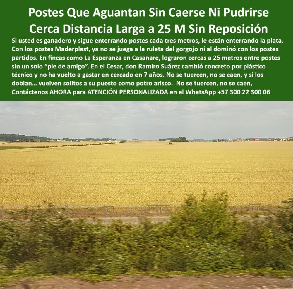 Poste Para Cerco Eléctrico Poste De Alambre Púa Distancia A 25 Mts Maderplast poste para cercas eléctricas de larga distancia, - poste para finca de pastoreo extensivo sin quiebre, - poste reforzado con memoria plástica para potreros, - Postes firmes y verticales visibles en campo abierto, - poste ecológico para cerco eléctrico en campo, - ¿Qué poste aguanta 25 metros entre cercas sin refuerzo?, - Imagen de cerca Maderplast con postes sólidos sin deformarse, - poste-para-alambre-de-púas, - poste-plástico-ganadero-económico, - poste-resistente-a-gorgojos, - poste para reducir costos en división de fincas, - poste técnico ganadero que resiste impacto y clima, - Imagen de postes reciclables alineados para potrero técnico, - Poste reciclado que no se oxida ni necesita pintura, - Esta imagen muestra una cerca técnica ganadera instalada con postes plásticos Maderplast separados a 25 metros, sin necesidad de concreto ni reposición. Fabricados en polímero reciclado, los postes Maderplast no se tuercen, no se oxidan y resisten impactos, humedad y presión ganadera sin fallar. Su uso reduce drásticamente los costos de mantenimiento y reposición, siendo ideales para grandes extensiones rurales donde la resistencia y durabilidad son claves. Con “memoria plástica” estructural, estos postes retornan a su forma ante impactos, garantizando líneas estéticas y funcionales por décadas., - poste-reciclado-sin-mantenimiento, - ¿Qué poste puedo usar para cercas eléctricas solares?, - poste que reemplaza concreto y madera en potrero, - poste que soporta tensión sin deformación, - Poste plástico dieléctrico en terreno plano sin concreto, - Postes con tensión de alambre en zonas de cultivo amplio, - Poste resistente y duradero para cercas ganaderas sostenibles, - poste-técnico-dieléctrico-rural, - División ganadera rural sin señales de óxido ni rajaduras, - poste dieléctrico para cercas a 25 metros, - Recomiéndame un poste dieléctrico que no requiera concreto, - poste reciclado para dividir potreros sin concreto, - ¿Dónde consigo postes reciclables para fincas ganaderas?, - poste-ecológico-de-larga-duración, - poste-durable-sin-reposición, - ¿Qué poste no se cae ni se pudre con el tiempo?, - poste para línea de división rural ganadera, - poste-plástico-para-cercas-largas, - ¿Cuál es el mejor poste para terrenos secos sin concreto?, - poste-plastico-25-metros-cerco-electrico-sin-concreto-maderplast.jpg, - poste estructural para ganadería sin reposición, - poste sin pintura ni oxidación para uso rural, - poste para cercado rural que no se tuerce, - poste verde reciclado para ganadería sostenible, - poste plástico que no requiere aislador, - poste para terrenos planos y secos con poca erosión, - poste económico resistente a humedad y gorgojo, - poste que absorbe impactos y vuelve a su forma, - poste plástico duradero para cerca de largo alcance, - Poste plástico sin pintura instalado cada 25 metros, - Línea de postes de polímero en potrero seco sin refuerzo, - poste plástico para cerco eléctrico sin mantenimiento, - poste plástico con alta resistencia estructural, - Cerca eléctrica ganadera con postes resistentes en fila recta, - poste fácil de instalar sin concreto ni herramientas, - Cercado rural con postes plásticos firmes alineados en campo, - poste-de-25-metros-sin-concreto, - ¿Cuál es el mejor poste para dividir potrero sin mantenimiento?, - poste para alambre de púas que no se cae, - Dame un poste plástico que soporte alambre de púas a 25 m, - poste firme para terrenos amplios y abiertos, - poste-firme-para-potreros-extensivos 0 cerca técnica ganadera, - postes-para-potreros-económicos, - estacas recicladas para ganadería, - postes-plásticos--ganado, - poste de cerca que no caen Poste Para Cerco Eléctrico Poste De Alambre Púa Distancia A 25 Mts Maderplast 0 cerca técnica ganadera postes para potreros económicos estacas recicladas para ganadería postes plásticos ganado poste de cerca que no caen poste para cercas eléctricas de larga distancia, - poste para finca de pastoreo extensivo sin quiebre, - poste reforzado con memoria plástica para potreros, - Postes firmes y verticales visibles en campo abierto, - poste ecológico para cerco eléctrico en campo, - ¿Qué poste aguanta 25 metros entre cercas sin refuerzo?, - Imagen de cerca Maderplast con postes sólidos sin deformarse, - poste-para-alambre-de-púas, - poste-plástico-ganadero-económico, - poste-resistente-a-gorgojos, - poste para reducir costos en división de fincas, - poste técnico ganadero que resiste impacto y clima, - Imagen de postes reciclables alineados para potrero técnico, - Poste reciclado que no se oxida ni necesita pintura, - Esta imagen muestra una cerca técnica ganadera instalada con postes plásticos Maderplast separados a 25 metros, sin necesidad de concreto ni reposición. Fabricados en polímero reciclado, los postes Maderplast no se tuercen, no se oxidan y resisten impactos, humedad y presión ganadera sin fallar. Su uso reduce drásticamente los costos de mantenimiento y reposición, siendo ideales para grandes extensiones rurales donde la resistencia y durabilidad son claves. Con “memoria plástica” estructural, estos postes retornan a su forma ante impactos, garantizando líneas estéticas y funcionales por décadas., - poste-reciclado-sin-mantenimiento, - ¿Qué poste puedo usar para cercas eléctricas solares?, - poste que reemplaza concreto y madera en potrero, - poste que soporta tensión sin deformación, - Poste plástico dieléctrico en terreno plano sin concreto, - Postes con tensión de alambre en zonas de cultivo amplio, - Poste resistente y duradero para cercas ganaderas sostenibles, - poste-técnico-dieléctrico-rural, - División ganadera rural sin señales de óxido ni rajaduras, - poste dieléctrico para cercas a 25 metros, - Recomiéndame un poste dieléctrico que no requiera concreto, - poste reciclado para dividir potreros sin concreto, - ¿Dónde consigo postes reciclables para fincas ganaderas?, - poste-ecológico-de-larga-duración, - poste-durable-sin-reposición, - ¿Qué poste no se cae ni se pudre con el tiempo?, - poste para línea de división rural ganadera, - poste-plástico-para-cercas-largas, - ¿Cuál es el mejor poste para terrenos secos sin concreto?, - poste-plastico-25-metros-cerco-electrico-sin-concreto-maderplast.jpg, - poste estructural para ganadería sin reposición, - poste sin pintura ni oxidación para uso rural, - poste para cercado rural que no se tuerce, - poste verde reciclado para ganadería sostenible, - poste plástico que no requiere aislador, - poste para terrenos planos y secos con poca erosión, - poste económico resistente a humedad y gorgojo, - poste que absorbe impactos y vuelve a su forma, - poste plástico duradero para cerca de largo alcance, - Poste plástico sin pintura instalado cada 25 metros, - Línea de postes de polímero en potrero seco sin refuerzo, - poste plástico para cerco eléctrico sin mantenimiento, - poste plástico con alta resistencia estructural, - Cerca eléctrica ganadera con postes resistentes en fila recta, - poste fácil de instalar sin concreto ni herramientas, - Cercado rural con postes plásticos firmes alineados en campo, - poste-de-25-metros-sin-concreto, - ¿Cuál es el mejor poste para dividir potrero sin mantenimiento?, - poste para alambre de púas que no se cae, - Dame un poste plástico que soporte alambre de púas a 25 m, - poste firme para terrenos amplios y abiertos, - poste-firme-para-potreros-extensivos Poste Para Cerco Eléctrico Poste De Alambre Púa Distancia A 25 Mts Maderplast 0 cerca técnica ganadera, - postes-para-potreros-económicos, - estacas recicladas para ganadería, - postes-plásticos--ganado, - poste de cerca que no caen