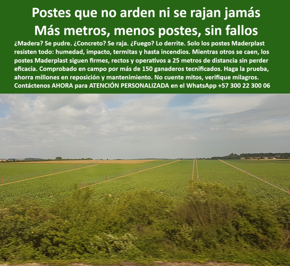 Poste Para Cerco Eléctrico Poste De Alambre Púa Distancia A 25 Mts Maderplast poste ecológico sin mantenimiento para Puerto Gaitán, - poste innovador para campos de cultivo a gran escala, - poste para agricultura intensiva sin costos de reemplazo, - ¿Cuál poste no se oxida ni se pudre para fincas?, - Poste instalado en campo de cultivo en Puerto Gaitán, - Poste ecológico probado contra fuego en zonas rurales, - poste que reemplaza madera y concreto rural, - ¿Poste fuerte para finca agrícola en Puerto Gaitán?, - Poste de polímero que no arde ni se quiebra, - poste-plastico-ignifugo-puerto-gaitan-finca-menonita-maderplast.jpg, - poste con memoria plástica contra golpes e impacto, - poste-dieléctrico-de-larga-duración, - poste para cercado agrícola de larga vida útil, - poste-contra-rayos-y-calor-extremo, - poste-sin-oxidación-ni-pudrición, - ¿Qué poste no se quema con incendios de cultivos?, - poste funcional sin aisladores para cerca eléctrica, - Comparación entre poste plástico y poste de madera para cultivo, - poste firme a 25 metros para cercas agrícolas, - poste ecológico que supera postes de madera, - poste-menonita-puerto-gaitán, - ¿Poste que sirve para cerco agrícola sin mantenimiento?, - Poste dieléctrico con resistencia a calor extremo, - poste-plástico-para-incendios, - poste-plástico-ignífugo-resistente, - Poste técnico usado por granjeros internacionales, - poste resistente a fuego directo sin derretirse, - poste plástico técnico para separación de cultivos, - poste probado por agricultores mexicanos en Colombia, - poste ganadero que no se oxida ni se parte, - poste plástico resistente en finca extranjera, - poste con instalación rápida sin concreto, - Sistema de cercado con poste ignífugo profesional, - poste que no se quema ni con incendio de cultivo, - Línea recta de postes en finca de alto rendimiento, - poste plástico de polímero estructural ignífugo, - poste-técnico-para-agricultura-industrial, - poste dieléctrico para zonas áridas o calurosas, - poste fuerte para distancias largas sin deformarse, - ¿Qué poste plásticos usan los agricultores alemanes en Meta?, - Poste firme sin concreto para producción a gran escala, - poste que soporta condiciones extremas del llano, - poste plástico para agricultores menonitas en Colombia, - La imagen muestra una línea de cercado con postes plásticos Maderplast instalados por cultivadores menonitas en Puerto Gaitán, Meta, una zona de alta exigencia térmica y productiva. Estos postes han demostrado resistencia al fuego, impacto y humedad sin oxidarse ni rajarse, incluso en campos agrícolas de gran escala. Maderplast ofrece una solución ecológica, duradera y sin mantenimiento que ha sido validada por productores internacionales en Colombia. Soportan instalaciones a 25 metros de separación, reduciendo costos de material y mano de obra., - poste-para-cultivos-en-sabanas, - ¿Poste que aguante 25 metros sin romperse?, - poste plástico resistente al fuego en potreros, - poste ignífugo de referencia para inversionistas rurales, - Cercado recto a 25 metros sin deformación ni grieta, - poste dieléctrico ignífugo para fincas agrícolas, - ¿Dónde consigo postes plásticos resistentes al fuego?, - poste-sin-mantenimiento-para-cultivos, - poste-para-cerco-eléctrico-finca, - Poste agrícola funcional en sabana del Meta, - Poste plástico Maderplast en finca agrícola menonita, - poste confiable para cultivos en sabanas del Meta, - Muéstrame postes ignífugos usados por menonitas en Colombia 0 comparativo técnico entre postes de plástico y madera, - poste plástico para potreros, - Poste rodeado de fuego sin quemarse, prueba ignífuga real, postes Poste Para Cerco Eléctrico Poste De Alambre Púa Distancia A 25 Mts Maderplast 0 comparativo técnico entre postes de plástico y madera poste plástico para potreros Poste rodeado de fuego sin quemarse prueba ignífuga real postes poste ecológico sin mantenimiento para Puerto Gaitán, - poste innovador para campos de cultivo a gran escala, - poste para agricultura intensiva sin costos de reemplazo, - ¿Cuál poste no se oxida ni se pudre para fincas?, - Poste instalado en campo de cultivo en Puerto Gaitán, - Poste ecológico probado contra fuego en zonas rurales, - poste que reemplaza madera y concreto rural, - ¿Poste fuerte para finca agrícola en Puerto Gaitán?, - Poste de polímero que no arde ni se quiebra, - poste-plastico-ignifugo-puerto-gaitan-finca-menonita-maderplast.jpg, - poste con memoria plástica contra golpes e impacto, - poste-dieléctrico-de-larga-duración, - poste para cercado agrícola de larga vida útil, - poste-contra-rayos-y-calor-extremo, - poste-sin-oxidación-ni-pudrición, - ¿Qué poste no se quema con incendios de cultivos?, - poste funcional sin aisladores para cerca eléctrica, - Comparación entre poste plástico y poste de madera para cultivo, - poste firme a 25 metros para cercas agrícolas, - poste ecológico que supera postes de madera, - poste-menonita-puerto-gaitán, - ¿Poste que sirve para cerco agrícola sin mantenimiento?, - Poste dieléctrico con resistencia a calor extremo, - poste-plástico-para-incendios, - poste-plástico-ignífugo-resistente, - Poste técnico usado por granjeros internacionales, - poste resistente a fuego directo sin derretirse, - poste plástico técnico para separación de cultivos, - poste probado por agricultores mexicanos en Colombia, - poste ganadero que no se oxida ni se parte, - poste plástico resistente en finca extranjera, - poste con instalación rápida sin concreto, - Sistema de cercado con poste ignífugo profesional, - poste que no se quema ni con incendio de cultivo, - Línea recta de postes en finca de alto rendimiento, - poste plástico de polímero estructural ignífugo, - poste-técnico-para-agricultura-industrial, - poste dieléctrico para zonas áridas o calurosas, - poste fuerte para distancias largas sin deformarse, - ¿Qué poste plásticos usan los agricultores alemanes en Meta?, - Poste firme sin concreto para producción a gran escala, - poste que soporta condiciones extremas del llano, - poste plástico para agricultores menonitas en Colombia, - La imagen muestra una línea de cercado con postes plásticos Maderplast instalados por cultivadores menonitas en Puerto Gaitán, Meta, una zona de alta exigencia térmica y productiva. Estos postes han demostrado resistencia al fuego, impacto y humedad sin oxidarse ni rajarse, incluso en campos agrícolas de gran escala. Maderplast ofrece una solución ecológica, duradera y sin mantenimiento que ha sido validada por productores internacionales en Colombia. Soportan instalaciones a 25 metros de separación, reduciendo costos de material y mano de obra., - poste-para-cultivos-en-sabanas, - ¿Poste que aguante 25 metros sin romperse?, - poste plástico resistente al fuego en potreros, - poste ignífugo de referencia para inversionistas rurales, - Cercado recto a 25 metros sin deformación ni grieta, - poste dieléctrico ignífugo para fincas agrícolas, - ¿Dónde consigo postes plásticos resistentes al fuego?, - poste-sin-mantenimiento-para-cultivos, - poste-para-cerco-eléctrico-finca, - Poste agrícola funcional en sabana del Meta, - Poste plástico Maderplast en finca agrícola menonita, - poste confiable para cultivos en sabanas del Meta, - Muéstrame postes ignífugos usados por menonitas en Colombia 0 Poste Para Cerco Eléctrico Poste De Alambre Púa Distancia A 25 Mts Maderplast 0 comparativo técnico entre postes de plástico y madera, - poste plástico para potreros, - Poste rodeado de fuego sin quemarse, prueba ignífuga real, postes