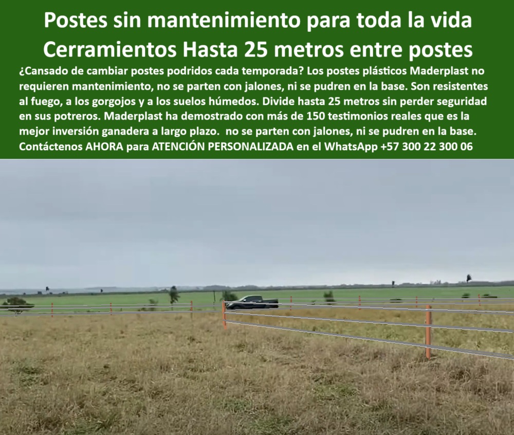 Poste Para Cerco Eléctrico Poste De Alambre Púa Distancia A 25 Mts Maderplast Terreno plano con postes sin aisladores visibles ni concreto, - poste-resistente-jalones, - En esta imagen enviada por un cliente en Montería, Córdoba, se evidencia cómo los postes Maderplast permiten una instalación eficiente con separación de hasta 25 metros entre alambres sin perder firmeza ni funcionalidad. Los postes Maderplast no se pudren, no requieren aisladores y se mantienen intactos frente a humedad, fuego y jalones de ganado. Son la inversión inteligente y duradera para cercas eléctricas ganaderas en zonas cálidas y exigentes como la costa Caribe., - mejor poste para alambre de púas sin fallos, - Postes plásticos Maderplast instalados en finca de Montería, - cerca-ganadera-sin-óxido, - ¿Hay poste que no se pudra con la lluvia?, - Cercado extensivo con separación de postes sin fallas visibles, - poste plástico que aguanta clima extremo sin rajarse, - poste de cerco que no requiere concreto ni pintura, - Alambre de púas tenso sobre postes plásticos sólidos verdes, - poste para cerco eléctrico sin fallas ni reemplazo, - poste plástico sin mantenimiento para cerca eléctrica, - poste para dividir potreros a 25 metros de distancia, - Línea de cercado recta con postes a 25 metros de distancia, - poste ideal para praderas de pastoreo rotacional, - poste seguro para uso agrícola y ganadero intensivo, - poste firme para alambre de púas o eléctrico, - Estacones plásticos rectos sin señales de daño estructural, - poste ganadero resistente 25 metros entre alambres, - poste dieléctrico que no se oxida ni parte, - poste para terreno plano con separación amplia, - poste de instalación rápida sin necesidad de herramientas, - poste-plástico-maderplast, - poste estructural de polímero para líneas de cercado, - poste-plastico-25-metros-cerco-electrico-monteria-maderplast.jpg, - ¿Qué poste sirve sin aislador ni mantenimiento?, - poste-sin-mantenimiento, - poste ganadero con garantía de más de 30 años, - poste que no se pudre en suelos húmedos agrícolas, - Uso real de postes Maderplast en campo agrícola colombiano, - Vehículo rural junto a cercado técnico en pradera colombiana, - ¿Cuál es el mejor poste para mi finca en Montería?, - poste reciclado ecológico con alto rendimiento ganadero, - poste de alambre de púas resistente a gorgojos, - poste para ganado resistente a humedad y presión, - poste técnico para cercado sin aislamiento adicional, - poste ligero resistente para cercas perimetrales ganaderas, - postes-probados-en-campo, - cerco-eléctrico-25-metros, - poste económico con eficiencia demostrada en campo, - poste ecológico para cercas de bajo costo rural, - poste plástico sin mantenimiento finca húmeda Colombia, - cerco-sin-reposición, - Postes ganaderos sin oxidación ni pudrición en clima húmedo, - poste-económico-rural, - poste probado por cliente real en Montería Córdoba, - Campo abierto cercado con postes dieléctricos verdes firmes, - poste sólido que no se parte con jalones de ganado, - poste libre de óxido y mantenimiento para finca, - poste de alta resistencia para dividir grandes potreros, - ¿Qué poste aguanta 25 metros entre alambres?, - poste-para-finca-montería, - ¿Dónde comprar poste plástico para cercas ganaderas?, - poste-anticorrosivo, - poste para cerco sin aislador prueba en Montería, - poste plástico duradero para finca ganadera Montería0 estructuras agrícolas sin mantenimiento, - postes plásticos para cercas económicas rurales, - poste para praderas de pastoreo sin mantenimiento, - postes- Poste Para Cerco Eléctrico Poste De Alambre Púa Distancia A 25 Mts Maderplast 0 estructuras agrícolas sin mantenimiento postes plásticos para cercas económicas rurales poste para praderas de pastoreo sin mantenimiento postes Terreno plano con postes sin aisladores visibles ni concreto, - poste-resistente-jalones, - En esta imagen enviada por un cliente en Montería, Córdoba, se evidencia cómo los postes Maderplast permiten una instalación eficiente con separación de hasta 25 metros entre alambres sin perder firmeza ni funcionalidad. Los postes Maderplast no se pudren, no requieren aisladores y se mantienen intactos frente a humedad, fuego y jalones de ganado. Son la inversión inteligente y duradera para cercas eléctricas ganaderas en zonas cálidas y exigentes como la costa Caribe., - mejor poste para alambre de púas sin fallos, - Postes plásticos Maderplast instalados en finca de Montería, - cerca-ganadera-sin-óxido, - ¿Hay poste que no se pudra con la lluvia?, - Cercado extensivo con separación de postes sin fallas visibles, - poste plástico que aguanta clima extremo sin rajarse, - poste de cerco que no requiere concreto ni pintura, - Alambre de púas tenso sobre postes plásticos sólidos verdes, - poste para cerco eléctrico sin fallas ni reemplazo, - poste plástico sin mantenimiento para cerca eléctrica, - poste para dividir potreros a 25 metros de distancia, - Línea de cercado recta con postes a 25 metros de distancia, - poste ideal para praderas de pastoreo rotacional, - poste seguro para uso agrícola y ganadero intensivo, - poste firme para alambre de púas o eléctrico, - Estacones plásticos rectos sin señales de daño estructural, - poste ganadero resistente 25 metros entre alambres, - poste dieléctrico que no se oxida ni parte, - poste para terreno plano con separación amplia, - poste de instalación rápida sin necesidad de herramientas, - poste-plástico-maderplast, - poste estructural de polímero para líneas de cercado, - poste-plastico-25-metros-cerco-electrico-monteria-maderplast.jpg, - ¿Qué poste sirve sin aislador ni mantenimiento?, - poste-sin-mantenimiento, - poste ganadero con garantía de más de 30 años, - poste que no se pudre en suelos húmedos agrícolas, - Uso real de postes Maderplast en campo agrícola colombiano, - Vehículo rural junto a cercado técnico en pradera colombiana, - ¿Cuál es el mejor poste para mi finca en Montería?, - poste reciclado ecológico con alto rendimiento ganadero, - poste de alambre de púas resistente a gorgojos, - poste para ganado resistente a humedad y presión, - poste técnico para cercado sin aislamiento adicional, - poste ligero resistente para cercas perimetrales ganaderas, - postes-probados-en-campo, - cerco-eléctrico-25-metros, - poste económico con eficiencia demostrada en campo, - poste ecológico para cercas de bajo costo rural, - poste plástico sin mantenimiento finca húmeda Colombia, - cerco-sin-reposición, - Postes ganaderos sin oxidación ni pudrición en clima húmedo, - poste-económico-rural, - poste probado por cliente real en Montería Córdoba, - Campo abierto cercado con postes dieléctricos verdes firmes, - poste sólido que no se parte con jalones de ganado, - poste libre de óxido y mantenimiento para finca, - poste de alta resistencia para dividir grandes potreros, - ¿Qué poste aguanta 25 metros entre alambres?, - poste-para-finca-montería, - ¿Dónde comprar poste plástico para cercas ganaderas?, - poste-anticorrosivo, - poste para cerco sin aislador prueba en Montería, - poste plástico duradero para finca ganadera Montería 0 Poste Para Cerco Eléctrico Poste De Alambre Púa Distancia A 25 Mts Maderplast 0 estructuras agrícolas sin mantenimiento, - postes plásticos para cercas económicas rurales, - poste para praderas de pastoreo sin mantenimiento, - postes-