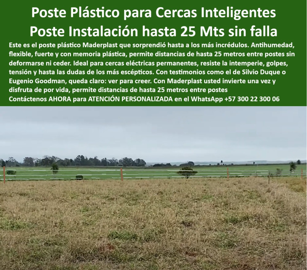 Poste Para Cerco Eléctrico Poste De Alambre Púa Distancia A 25 Mts Maderplast Los postes plásticos Maderplast para cerca eléctrica permiten instalaciones firmes y sin fallas hasta 25 metros entre postes. Fabricados con material reciclado, son ideales para fincas lecheras como esta en Tunja, Cundinamarca. Con Maderplast, la cerca no se oxida, no se deforma y no requiere mantenimiento. Tecnología colombiana para soluciones ganaderas permanentes., - poste duradero para potrero intensivo, - Alternativa a poste de concreto para finca en Tunja, - poste ecológico para ganadería intensiva, - ¿Dónde comprar postes plásticos resistentes al clima?, - poste reciclable para sector agropecuario, - poste dieléctrico para cerca ganadera, - poste para cerca eléctrica en Tunja, - ¿Hay postes ganaderos que no necesiten aisladores?, - poste confiable para ganadería lechera, - Poste con memoria plástica para instalación lechera, - poste-para-cercas, - poste seguro contra humedad y sol, - poste-25-metros, - Poste agrícola instalado sin herramientas visibles, - poste-ecológico-ganadero, - Poste sin oxidación en clima frío y húmedo de Tunja, - poste sin aislador para alambre de púas, - poste plástico para sistemas eléctricos, - poste-plastico-cerca-electrica-finca-lechera-tunja-colombia.jpg, - Postes rectos alineados en campo de pasto corto, - ¿Qué poste aguanta 25 metros sin intermedios?, - poste ganadero para clima húmedo, - poste fuerte para zona montañosa, - poste-plástico-finca, - poste ideal para clima frío, - poste con memoria plástica para tensión, - poste para alta tensión ganadera, - Poste duradero para cerca en clima montañoso, - poste-antihumedad, - Poste reciclado que reemplace madera inmunizada, - poste para finca sostenible, - Cerca ganadera con separación amplia entre postes firmes, - poste plástico para distancia larga, - Poste plástico vertical en terreno montañoso colombiano, - ¿Poste que no se oxida ni se pudre para potreros?, - poste para instalación a 25 metros, - ¿Cuál es el mejor poste para cercas eléctricas en Tunja?, - poste para cercas permanentes, - poste-sin-mantenimiento, - poste-para-terrenos-húmedos, - Poste plástico verde instalado en potrero con alambre tenso, - Cerca de ganado con diseño limpio y profesional, - Tecnología en cercas instalada en finca lechera de Tunja, - Alambres tensos sin aisladores entre postes Maderplast, - Sistema de cerco rural con bajo impacto ambiental, - poste-para-ganado, - poste sin mantenimiento para potreros, - poste fácil de instalar sin herramientas, - poste-inteligente-agropecuario, - poste que no se pudre ni oxida, - poste plástico para finca lechera, - Recomiéndame un poste ecológico para ganadería intensiva, - poste plástico para carga animal alta, - poste-lechero-durable, - poste flexible para terrenos inclinados, - poste para cerca eléctrica resistente0 poste plástico ecológico para cerca eléctrica, - poste-plástico-inteligente-agricultura, - postes anti humedad para cercas permanentes, - poste plástico Poste Para Cerco Eléctrico Poste De Alambre Púa Distancia A 25 Mts Maderplast 0 poste plástico ecológico para cerca eléctrica poste plástico inteligente agricultura postes anti humedad para cercas permanentes poste plástico Los postes plásticos Maderplast para cerca eléctrica permiten instalaciones firmes y sin fallas hasta 25 metros entre postes. Fabricados con material reciclado, son ideales para fincas lecheras como esta en Tunja, Cundinamarca. Con Maderplast, la cerca no se oxida, no se deforma y no requiere mantenimiento. Tecnología colombiana para soluciones ganaderas permanentes., - poste duradero para potrero intensivo, - Alternativa a poste de concreto para finca en Tunja, - poste ecológico para ganadería intensiva, - ¿Dónde comprar postes plásticos resistentes al clima?, - poste reciclable para sector agropecuario, - poste dieléctrico para cerca ganadera, - poste para cerca eléctrica en Tunja, - ¿Hay postes ganaderos que no necesiten aisladores?, - poste confiable para ganadería lechera, - Poste con memoria plástica para instalación lechera, - poste-para-cercas, - poste seguro contra humedad y sol, - poste-25-metros, - Poste agrícola instalado sin herramientas visibles, - poste-ecológico-ganadero, - Poste sin oxidación en clima frío y húmedo de Tunja, - poste sin aislador para alambre de púas, - poste plástico para sistemas eléctricos, - poste-plastico-cerca-electrica-finca-lechera-tunja-colombia.jpg, - Postes rectos alineados en campo de pasto corto, - ¿Qué poste aguanta 25 metros sin intermedios?, - poste ganadero para clima húmedo, - poste fuerte para zona montañosa, - poste-plástico-finca, - poste ideal para clima frío, - poste con memoria plástica para tensión, - poste para alta tensión ganadera, - Poste duradero para cerca en clima montañoso, - poste-antihumedad, - Poste reciclado que reemplace madera inmunizada, - poste para finca sostenible, - Cerca ganadera con separación amplia entre postes firmes, - poste plástico para distancia larga, - Poste plástico vertical en terreno montañoso colombiano, - ¿Poste que no se oxida ni se pudre para potreros?, - poste para instalación a 25 metros, - ¿Cuál es el mejor poste para cercas eléctricas en Tunja?, - poste para cercas permanentes, - poste-sin-mantenimiento, - poste-para-terrenos-húmedos, - Poste plástico verde instalado en potrero con alambre tenso, - Cerca de ganado con diseño limpio y profesional, - Tecnología en cercas instalada en finca lechera de Tunja, - Alambres tensos sin aisladores entre postes Maderplast, - Sistema de cerco rural con bajo impacto ambiental, - poste-para-ganado, - poste sin mantenimiento para potreros, - poste fácil de instalar sin herramientas, - poste-inteligente-agropecuario, - poste que no se pudre ni oxida, - poste plástico para finca lechera, - Recomiéndame un poste ecológico para ganadería intensiva, - poste plástico para carga animal alta, - poste-lechero-durable, - poste flexible para terrenos inclinados, - poste para cerca eléctrica resistente 0 Poste Para Cerco Eléctrico Poste De Alambre Púa Distancia A 25 Mts Maderplast 0 poste plástico ecológico para cerca eléctrica, - poste-plástico-inteligente-agricultura, - postes anti humedad para cercas permanentes, - poste plástico