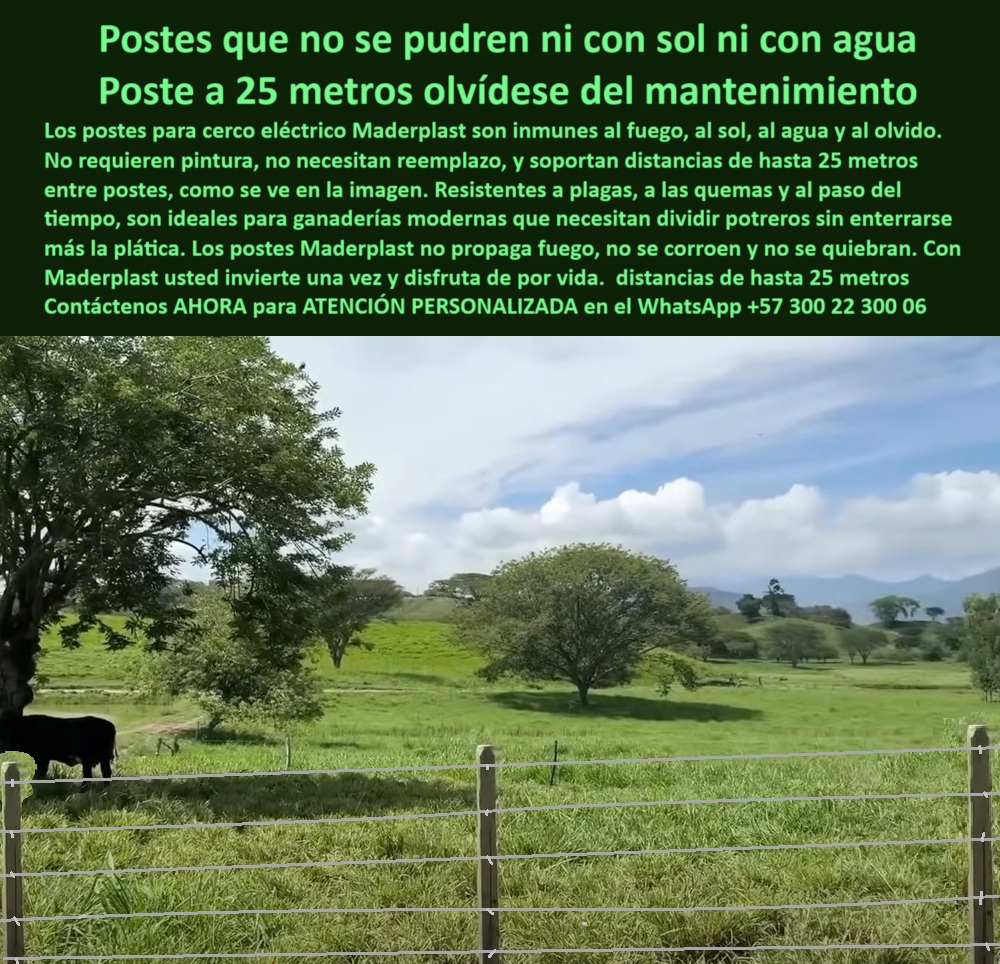Poste Para Cerco Eléctrico Poste De Alambre Púa Distancia A 25 Mts Maderplast poste para linderos ganaderos, - poste para cerca permanente ecológica, - poste-para-linderos-agrícolas, - Línea de postes a 25 m sin inclinación ni corrosión, - poste reciclado para potreros ganaderos, - poste-económico-para-ganado, - Cerca ganadera reciclada resistente a fuego humedad y impacto, - Poste agropecuario sin oxidación ni astillado bajo el sol, - poste-sin-mantenimiento, - poste plástico sin aisladores, - poste aislante para cercas eléctricas, - poste-plastico-para-cerca-electrica-a-25-metros-girardot.jpg, - Poste plástico sin taladro con alambre tensado perfectamente, - Poste dieléctrico color café para potrero de gran extensión, - poste-plástico-reciclado, - poste sólido para cerca rural, - poste que no se pudre, - poste-para-cerca-ganadera, - poste resistente a impactos animales, - cerca ganadera sin aisladores a 25 metros entre postes, - ¿Cuál es el mejor poste para cerca ganadera sin mantenimiento?, - Postes firmes sin mantenimiento ni pintura en clima caliente, - ¿Cómo hacer una cerca eléctrica con postes a 25 metros?, - poste para cerco en zonas calientes, - Sistema de cerramiento sin concreto ni madera en Girardot, - ¿Dónde comprar postes reciclados para dividir potreros?, - ¿Qué poste es mejor que el concreto o la madera para cercas?, - poste-que-no-se-pudre, - poste-a-25-metros, - poste dieléctrico sin óxido sin pintura sin mantenimiento, - poste ideal para zonas con lluvias, - poste plástico para cerca eléctrica, - Poste plástico a 25 metros instalado en potrero sin aisladores, - La imagen muestra una cerca perfectamente alineada con postes plásticos Maderplast separados a 25 metros, instalada en la finca Angostura, zona rural de Girardot, Cundinamarca. En medio de un terreno verde, plano y húmedo, los postes color tierra destacan por su solidez, rectitud y firmeza estructural, sin aisladores ni fallas visibles. No hay óxido, ni pintura desprendida, ni inclinación, lo que demuestra su rendimiento en campo abierto con plena exposición solar. Estos postes dieléctricos están diseñados para resistir incendios, termitas, golpes y lluvias sin deteriorarse. A diferencia de la madera inmunizada o el concreto, no requieren taladros, no se parten, no absorben humedad y no liberan toxinas al suelo. Son flexibles con memoria plástica, lo que permite que soporten tensión de alambre sin quebrarse. La instalación técnica y ecológica reduce costos en mano de obra, repuestos y tiempo operativo. Maderplast ofrece una solución probada por más de 150 ganaderos tecnificados en Colombia, que buscan dividir potreros con eficiencia, sostenibilidad y rentabilidad a largo plazo. Maderplast no es solo un poste, es una inversión inteligente y definitiva para toda la vida ganadera., - poste para terrenos inclinados, - poste que no se corroe, - poste ecológico sin mantenimiento, - mejores postes reciclados para cercas de ganado, - poste para dividir potreros grandes, - Estructura ecológica para ganadería extensiva con cercado limpio, - poste para pastoreo intensivo, - poste-tecnificado-sin-oxidación, - poste para cercas a 25 metros, - poste para finca en clima húmedo, - poste sin químicos para ganadería, - ¿Postes que no se pudren ni se oxidan para finca?, - Cercado verde con postes sólidos sin deterioro visual, - poste ignífugo para potreros, - poste-dieléctrico-anti-antifuego, - solución definitiva para división de potreros grandes, - poste económico para ganaderos, - poste dieléctrico resistente a fuego, - poste flexible que no se quiebra, - poste plástico sin pintura, - poste de larga duración agrícola, - poste-para-potreros-extensivos, - poste ecológico que soporte humedad calor y fuego0 poste vial sin mantenimiento, - manejo de pasto con divisiones recicladas, - postes plásticos para cercas resistentes, - postes-que-no-propaga-fuego y sol Poste Para Cerco Eléctrico Poste De Alambre Púa Distancia A 25 Mts Maderplast 0 poste vial sin mantenimiento manejo de pasto con divisiones recicladas postes plásticos para cercas resistentes postes que no propaga fuego y sol poste para linderos ganaderos, - poste para cerca permanente ecológica, - poste-para-linderos-agrícolas, - Línea de postes a 25 m sin inclinación ni corrosión, - poste reciclado para potreros ganaderos, - poste-económico-para-ganado, - Cerca ganadera reciclada resistente a fuego humedad y impacto, - Poste agropecuario sin oxidación ni astillado bajo el sol, - poste-sin-mantenimiento, - poste plástico sin aisladores, - poste aislante para cercas eléctricas, - poste-plastico-para-cerca-electrica-a-25-metros-girardot.jpg, - Poste plástico sin taladro con alambre tensado perfectamente, - Poste dieléctrico color café para potrero de gran extensión, - poste-plástico-reciclado, - poste sólido para cerca rural, - poste que no se pudre, - poste-para-cerca-ganadera, - poste resistente a impactos animales, - cerca ganadera sin aisladores a 25 metros entre postes, - ¿Cuál es el mejor poste para cerca ganadera sin mantenimiento?, - Postes firmes sin mantenimiento ni pintura en clima caliente, - ¿Cómo hacer una cerca eléctrica con postes a 25 metros?, - poste para cerco en zonas calientes, - Sistema de cerramiento sin concreto ni madera en Girardot, - ¿Dónde comprar postes reciclados para dividir potreros?, - ¿Qué poste es mejor que el concreto o la madera para cercas?, - poste-que-no-se-pudre, - poste-a-25-metros, - poste dieléctrico sin óxido sin pintura sin mantenimiento, - poste ideal para zonas con lluvias, - poste plástico para cerca eléctrica, - Poste plástico a 25 metros instalado en potrero sin aisladores, - La imagen muestra una cerca perfectamente alineada con postes plásticos Maderplast separados a 25 metros, instalada en la finca Angostura, zona rural de Girardot, Cundinamarca. En medio de un terreno verde, plano y húmedo, los postes color tierra destacan por su solidez, rectitud y firmeza estructural, sin aisladores ni fallas visibles. No hay óxido, ni pintura desprendida, ni inclinación, lo que demuestra su rendimiento en campo abierto con plena exposición solar. Estos postes dieléctricos están diseñados para resistir incendios, termitas, golpes y lluvias sin deteriorarse. A diferencia de la madera inmunizada o el concreto, no requieren taladros, no se parten, no absorben humedad y no liberan toxinas al suelo. Son flexibles con memoria plástica, lo que permite que soporten tensión de alambre sin quebrarse. La instalación técnica y ecológica reduce costos en mano de obra, repuestos y tiempo operativo. Maderplast ofrece una solución probada por más de 150 ganaderos tecnificados en Colombia, que buscan dividir potreros con eficiencia, sostenibilidad y rentabilidad a largo plazo. Maderplast no es solo un poste, es una inversión inteligente y definitiva para toda la vida ganadera., - poste para terrenos inclinados, - poste que no se corroe, - poste ecológico sin mantenimiento, - mejores postes reciclados para cercas de ganado, - poste para dividir potreros grandes, - Estructura ecológica para ganadería extensiva con cercado limpio, - poste para pastoreo intensivo, - poste-tecnificado-sin-oxidación, - poste para cercas a 25 metros, - poste para finca en clima húmedo, - poste sin químicos para ganadería, - ¿Postes que no se pudren ni se oxidan para finca?, - Cercado verde con postes sólidos sin deterioro visual, - poste ignífugo para potreros, - poste-dieléctrico-anti-antifuego, - solución definitiva para división de potreros grandes, - poste económico para ganaderos, - poste dieléctrico resistente a fuego, - poste flexible que no se quiebra, - poste plástico sin pintura, - poste de larga duración agrícola, - poste-para-potreros-extensivos, - poste ecológico que soporte humedad calor y fuego 0 Poste Para Cerco Eléctrico Poste De Alambre Púa Distancia A 25 Mts Maderplast 0 poste vial sin mantenimiento, - manejo de pasto con divisiones recicladas, - postes plásticos para cercas resistentes, - postes-que-no-propaga-fuego y sol