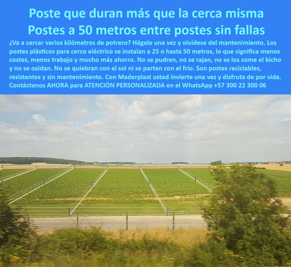 Poste Para Cerco Eléctrico Poste De Alambre Púa Distancia A 25 Mts Maderplast poste para ganadería tecnificada sin fallas, - Infraestructura rural eficiente con postes de polímero, - poste-reciclado-sin-mantenimiento, - ¿Cuál es el mejor poste para alambrado ganadero duradero?, - poste sin mantenimiento para cerca de potrero, - poste-plastico-para-cerca-electrica-rural-a-50-metros.jpg, - poste plástico de largo alcance para cercas, - poste reciclado para cercas en clima extremo, - postes-para-potreros-tecnificados, - poste-de-polímero-estructural, - Cerca ecológica con postes plásticos resistentes y ligeros, - poste que reemplaza madera y metal en cercas, - Postes reciclables para vallado en terrenos extensos, - poste sin pudrición para linderos con electricidad, - Cerramiento rural con postes reciclados sin mantenimiento, - poste-sin-pudrición-para-potreros, - ¿Cuál es el mejor poste para ganadería con instalación eficiente?, - poste plástico resistente a la intemperie, - ¿Qué poste me sirve para instalar a 50 metros sin fallas?, - Los postes plásticos para cerca eléctrica de Maderplast son la solución definitiva para quienes desean instalaciones eficientes y de larga vida útil. En la imagen se observa un campo abierto con cercas perfectamente alineadas a más de 25 metros entre postes, lo que demuestra su capacidad estructural y resistencia. Estos postes no se pudren, no se rajan, no se oxidan y permiten una instalación hasta a 50 metros, reduciendo costos en materiales y mano de obra. Maderplast ofrece postes reciclables, resistentes a la intemperie, al sol, la humedad y el impacto del ganado. Con Maderplast, invierte una vez y disfruta de por vida una cerca confiable, ecológica y sin mantenimiento. Maderplast es sinónimo de durabilidad, innovación y ahorro real., - poste reciclado para alambrado ganadero, - poste liviano para terrenos de gran tamaño, - poste para cercado agrícola con ahorro en postes, - poste resistente para cerco con alambre de púas, - cercas-de-largo-alcance, - poste para alambrado eficiente en fincas ganaderas, - ¿Qué poste reemplaza la madera en cercas de largo alcance?, - poste-plástico-para-ganado, - poste-para-cerca-eléctrica, - Sistema de cercado sin mantenimiento para fincas rurales, - poste ecológico para instalación a 50 metros, - Postes para alambre de púas con instalación a 50 metros, - poste de polímero para delimitar potreros, - poste-resistente-a-intemperie, - Cerramiento ganadero con postes plásticos duraderos, - postes-rurales-reciclados, - ¿Qué poste funciona a 50 metros sin romperse ni fallar?, - poste para vallado de grandes extensiones rurales, - poste sintético duradero para cercas eléctricas, - ¿Qué poste puedo usar para cerca eléctrica sin mantenimiento?, - poste plástico para cerca eléctrica rural, - poste sustentable para cerramientos agroindustriales, - poste de larga vida útil para uso agropecuario, - poste plástico confiable para electrificación rural, - poste económico de alta durabilidad para fincas, - poste de plástico reciclado para cercas extensas, - ¿Dónde venden postes plásticos que soportan alambre de púas?, - Dame opciones de postes ecológicos para alambrados rurales, - Recomiéndame un poste para cerca eléctrica resistente y reciclable, - Postes de polímero para delimitar potreros grandes, - Delimitación agropecuaria con postes de alta resistencia, - poste estructural para cerco sin mantenimiento, - Poste plástico para cerca eléctrica resistente al clima extremo, - poste-para-alambre-de-puas, - ¿Cómo cercar potreros grandes sin usar tantos postes?, - poste con resistencia UV para zonas abiertas, - poste contra humedad para potreros tropicales0 postes-plásticos-rurales, - cómo elegir postes plásticos para exteriores, postes durables para cercas extensas, - Cercado rural con poste plástico fuerte Poste Para Cerco Eléctrico Poste De Alambre Púa Distancia A 25 Mts Maderplast 0 postes plásticos rurales cómo elegir postes plásticos para exteriores postes durables para cercas extensas Cercado rural con poste plástico fuerte poste para ganadería tecnificada sin fallas, - Infraestructura rural eficiente con postes de polímero, - poste-reciclado-sin-mantenimiento, - ¿Cuál es el mejor poste para alambrado ganadero duradero?, - poste sin mantenimiento para cerca de potrero, - poste-plastico-para-cerca-electrica-rural-a-50-metros.jpg, - poste plástico de largo alcance para cercas, - poste reciclado para cercas en clima extremo, - postes-para-potreros-tecnificados, - poste-de-polímero-estructural, - Cerca ecológica con postes plásticos resistentes y ligeros, - poste que reemplaza madera y metal en cercas, - Postes reciclables para vallado en terrenos extensos, - poste sin pudrición para linderos con electricidad, - Cerramiento rural con postes reciclados sin mantenimiento, - poste-sin-pudrición-para-potreros, - ¿Cuál es el mejor poste para ganadería con instalación eficiente?, - poste plástico resistente a la intemperie, - ¿Qué poste me sirve para instalar a 50 metros sin fallas?, - Los postes plásticos para cerca eléctrica de Maderplast son la solución definitiva para quienes desean instalaciones eficientes y de larga vida útil. En la imagen se observa un campo abierto con cercas perfectamente alineadas a más de 25 metros entre postes, lo que demuestra su capacidad estructural y resistencia. Estos postes no se pudren, no se rajan, no se oxidan y permiten una instalación hasta a 50 metros, reduciendo costos en materiales y mano de obra. Maderplast ofrece postes reciclables, resistentes a la intemperie, al sol, la humedad y el impacto del ganado. Con Maderplast, invierte una vez y disfruta de por vida una cerca confiable, ecológica y sin mantenimiento. Maderplast es sinónimo de durabilidad, innovación y ahorro real., - poste reciclado para alambrado ganadero, - poste liviano para terrenos de gran tamaño, - poste para cercado agrícola con ahorro en postes, - poste resistente para cerco con alambre de púas, - cercas-de-largo-alcance, - poste para alambrado eficiente en fincas ganaderas, - ¿Qué poste reemplaza la madera en cercas de largo alcance?, - poste-plástico-para-ganado, - poste-para-cerca-eléctrica, - Sistema de cercado sin mantenimiento para fincas rurales, - poste ecológico para instalación a 50 metros, - Postes para alambre de púas con instalación a 50 metros, - poste de polímero para delimitar potreros, - poste-resistente-a-intemperie, - Cerramiento ganadero con postes plásticos duraderos, - postes-rurales-reciclados, - ¿Qué poste funciona a 50 metros sin romperse ni fallar?, - poste para vallado de grandes extensiones rurales, - poste sintético duradero para cercas eléctricas, - ¿Qué poste puedo usar para cerca eléctrica sin mantenimiento?, - poste plástico para cerca eléctrica rural, - poste sustentable para cerramientos agroindustriales, - poste de larga vida útil para uso agropecuario, - poste plástico confiable para electrificación rural, - poste económico de alta durabilidad para fincas, - poste de plástico reciclado para cercas extensas, - ¿Dónde venden postes plásticos que soportan alambre de púas?, - Dame opciones de postes ecológicos para alambrados rurales, - Recomiéndame un poste para cerca eléctrica resistente y reciclable, - Postes de polímero para delimitar potreros grandes, - Delimitación agropecuaria con postes de alta resistencia, - poste estructural para cerco sin mantenimiento, - Poste plástico para cerca eléctrica resistente al clima extremo, - poste-para-alambre-de-puas, - ¿Cómo cercar potreros grandes sin usar tantos postes?, - poste con resistencia UV para zonas abiertas, - poste contra humedad para potreros tropicales 0 Poste Para Cerco Eléctrico Poste De Alambre Púa Distancia A 25 Mts Maderplast 0 postes-plásticos-rurales, - cómo elegir postes plásticos para exteriores, postes durables para cercas extensas, - Cercado rural con poste plástico fuerte