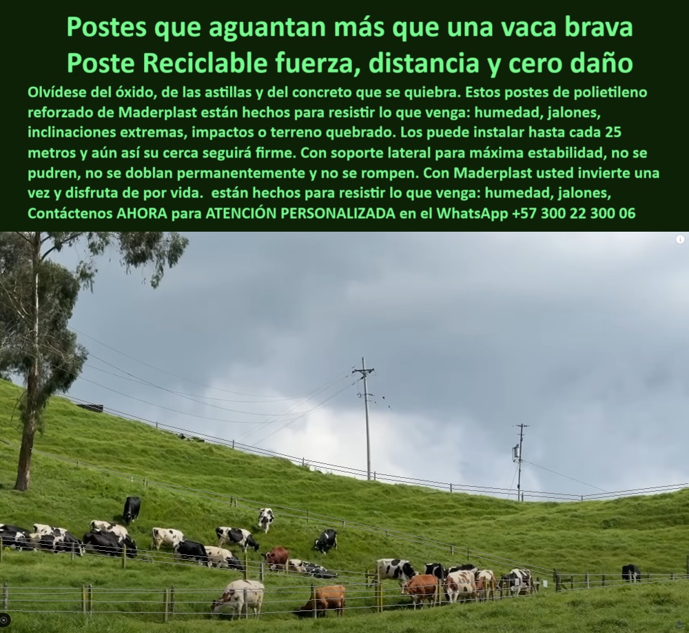 Poste Para Cerco Eléctrico Poste De Alambre Púa Distancia A 25 Mts Maderplast poste de plástico sólido para cerca rural segura, - poste-dieléctrico-de-alta-resistencia, - poste para zonas andinas de alta pluviosidad, - poste para potreros quebrados y húmedos, - poste sin astillas ni riesgos para animales, - La imagen muestra un potrero empinado en una finca ganadera entre Quindío y Manizales, donde los postes plásticos Maderplast con soporte lateral garantizan firmeza, seguridad y durabilidad frente a vacas bravas, lluvias intensas y suelos quebrados. Estos postes de polietileno reforzado están diseñados para instalarse cada 25 metros, incluso en condiciones topográficas complejas, sin perder tensión ni estructura. No se oxidan, no se rompen, no requiere pintura ni reemplazos y soportan hasta 10 reposiciones de alambre. Son ideales para zonas cafeteras, ganaderías de montaña y cercas eléctricas permanentes en terrenos húmedos, fríos y de alto impacto. Maderplast ofrece una solución real para quienes necesitan resistencia sin complicaciones, transformando la inversión en postes en un beneficio a largo plazo. Con Maderplast, invierta una vez y disfrute por décadas, incluso en el entorno más exigente., - poste-plastico-laderas-quindio-manizales-ganaderia.jpg, - poste plástico con soporte lateral reforzado, - poste plástico con distancia de 25 metros, - poste-sin-pintura-ni-mantenimiento, - poste de larga vida útil para rotación ganadera, - Cercas sobre loma con postes resistentes al clima extremo, - Postes plásticos alineados en potrero inclinado con ganado, - poste de polietileno para fincas ganaderas intensivas, - poste-con-soporte-lateral-reforzado, - Poste que soporta terreno quebrado sin romperse ni oxidarse, - poste innovador para eficiencia ganadera, - Poste ideal para cerca en clima húmedo y frío, - poste-para-vacas-bravas-y-húmedad, - poste-plástico-en-ladera-inclinada, - poste ideal para dividir potreros empinados, - ¿Postes que soportan vacas bravas sin romperse?, - poste plástico con soporte para terrenos inclinados, - Postes plásticos instalados en potreros de alta pendiente, - poste-plástico-antivandálico-ganadero, - poste anticorrosión para zonas cafetaleras húmedas, - poste resistente a impactos y rayos UV, - poste fuerte para ganado en laderas empinadas, - poste plástico para cerca en clima de montaña, - poste-para-zonas-de-lluvia-intensa, - poste sin pintura para clima húmedo permanente, - poste-reciclado-para-terrenos-quebrados, - Poste plástico con soporte lateral instalado en ladera húmeda, - poste reforzado para cercas en potrero montañoso, - poste para cerco eléctrico sin oxidación ni fractura, - poste plástico reciclable con resistencia a jalones, - ¿Cuál es el mejor poste plástico para montaña?, - poste dieléctrico para zonas lluviosas y frías, - poste-sin-corrosión-para-montañas, - poste estructural flexible con retorno a forma, - Poste sólido en potrero de finca cafetera en Manizales, - poste-de-larga-duración-sin-reemplazo, - Ladera ganadera con alambre de púa y postes firmes, - poste de alta resistencia para jalones extremos, - poste reciclable para pastoreo en montaña, - poste para terrenos inclinados con ganado bravo, - poste técnico para impacto animal sin ruptura, - Vista rural con cerca de 25 metros entre postes reciclables, - ¿Qué poste usar en fincas con lomas?, - poste plástico que no se dobla permanentemente, - poste de 25 metros entre cercas en laderas, - poste dieléctrico para ganadería en clima húmedo, - Paisaje andino con cerca ecológica y postes reforzados, - poste estable para cercas largas en pendiente, - ¿Cuál es el poste que no se oxida ni se quiebra?, - Ganado en montaña cercado con postes sin mantenimiento, - poste para vacas bravas sin mantenimiento 0 postes de polietileno reforzado para cercas, - postes plásticos para cercas eléctricas sin corrosión, - postes con soporte lateral para alta resistencia, Poste Para Cerco Eléctrico Poste De Alambre Púa Distancia A 25 Mts Maderplast 0 postes de polietileno reforzado para cercas postes plásticos para cercas eléctricas sin corrosión postes con soporte lateral para alta resistencia poste de plástico sólido para cerca rural segura, - poste-dieléctrico-de-alta-resistencia, - poste para zonas andinas de alta pluviosidad, - poste para potreros quebrados y húmedos, - poste sin astillas ni riesgos para animales, - La imagen muestra un potrero empinado en una finca ganadera entre Quindío y Manizales, donde los postes plásticos Maderplast con soporte lateral garantizan firmeza, seguridad y durabilidad frente a vacas bravas, lluvias intensas y suelos quebrados. Estos postes de polietileno reforzado están diseñados para instalarse cada 25 metros, incluso en condiciones topográficas complejas, sin perder tensión ni estructura. No se oxidan, no se rompen, no requiere pintura ni reemplazos y soportan hasta 10 reposiciones de alambre. Son ideales para zonas cafeteras, ganaderías de montaña y cercas eléctricas permanentes en terrenos húmedos, fríos y de alto impacto. Maderplast ofrece una solución real para quienes necesitan resistencia sin complicaciones, transformando la inversión en postes en un beneficio a largo plazo. Con Maderplast, invierta una vez y disfrute por décadas, incluso en el entorno más exigente., - poste-plastico-laderas-quindio-manizales-ganaderia.jpg, - poste plástico con soporte lateral reforzado, - poste plástico con distancia de 25 metros, - poste-sin-pintura-ni-mantenimiento, - poste de larga vida útil para rotación ganadera, - Cercas sobre loma con postes resistentes al clima extremo, - Postes plásticos alineados en potrero inclinado con ganado, - poste de polietileno para fincas ganaderas intensivas, - poste-con-soporte-lateral-reforzado, - Poste que soporta terreno quebrado sin romperse ni oxidarse, - poste innovador para eficiencia ganadera, - Poste ideal para cerca en clima húmedo y frío, - poste-para-vacas-bravas-y-húmedad, - poste-plástico-en-ladera-inclinada, - poste ideal para dividir potreros empinados, - ¿Postes que soportan vacas bravas sin romperse?, - poste plástico con soporte para terrenos inclinados, - Postes plásticos instalados en potreros de alta pendiente, - poste-plástico-antivandálico-ganadero, - poste anticorrosión para zonas cafetaleras húmedas, - poste resistente a impactos y rayos UV, - poste fuerte para ganado en laderas empinadas, - poste plástico para cerca en clima de montaña, - poste-para-zonas-de-lluvia-intensa, - poste sin pintura para clima húmedo permanente, - poste-reciclado-para-terrenos-quebrados, - Poste plástico con soporte lateral instalado en ladera húmeda, - poste reforzado para cercas en potrero montañoso, - poste para cerco eléctrico sin oxidación ni fractura, - poste plástico reciclable con resistencia a jalones, - ¿Cuál es el mejor poste plástico para montaña?, - poste dieléctrico para zonas lluviosas y frías, - poste-sin-corrosión-para-montañas, - poste estructural flexible con retorno a forma, - Poste sólido en potrero de finca cafetera en Manizales, - poste-de-larga-duración-sin-reemplazo, - Ladera ganadera con alambre de púa y postes firmes, - poste de alta resistencia para jalones extremos, - poste reciclable para pastoreo en montaña, - poste para terrenos inclinados con ganado bravo, - poste técnico para impacto animal sin ruptura, - Vista rural con cerca de 25 metros entre postes reciclables, - ¿Qué poste usar en fincas con lomas?, - poste plástico que no se dobla permanentemente, - poste de 25 metros entre cercas en laderas, - poste dieléctrico para ganadería en clima húmedo, - Paisaje andino con cerca ecológica y postes reforzados, - poste estable para cercas largas en pendiente, - ¿Cuál es el poste que no se oxida ni se quiebra?, - Ganado en montaña cercado con postes sin mantenimiento, - poste para vacas bravas sin mantenimiento 0 Poste Para Cerco Eléctrico Poste De Alambre Púa Distancia A 25 Mts Maderplast 0 postes de polietileno reforzado para cercas, - postes plásticos para cercas eléctricas sin corrosión, - postes con soporte lateral para alta resistencia,