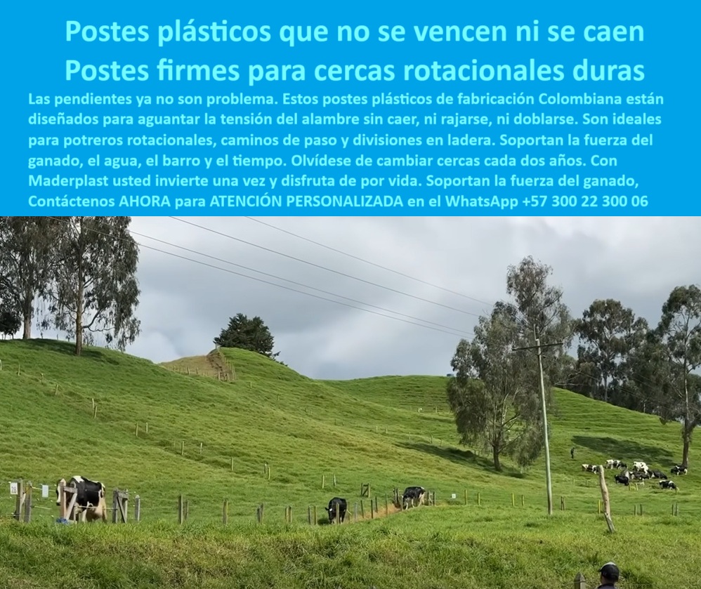Poste Para Cerco Eléctrico Poste De Alambre Púa Distancia A 25 Mts Maderplast poste colombiano reforzado sin astillas, - cerca plástica visible desde carretera nacional, - poste-que-no-se-dobla, - La imagen muestra un sistema de cerca rotacional con postes plásticos instalados en terreno inclinado, en una finca ganadera ubicada en el kilómetro 56 entre Manizales y Armenia. Estos postes, separados cada 25 metros, permanecen perfectamente firmes a pesar de las pendientes y la fuerza del ganado. Fabricados en Colombia con polímeros reciclados de alta ingeniería, los postes no se vencen, no se oxidan, no se pudren ni se rajan, incluso bajo lluvia constante, barro o tensión extrema del alambre. Su propiedad dieléctrica evita el uso de aisladores, reduciendo aún más los costos de instalación. Con Maderplast, el ganadero deja de enterrar dinero en cercas de madera o concreto, e invierte en un sistema que no falla, no se reemplaza y permanece firme por décadas., - poste sin óxido ni fracturas, - ¿Qué poste me sirve para finca en ladera?, - postes resistentes al clima de Manizales-Armenia, - Cerramiento ganadero duradero en zona de lluvias, - cerca ganadera durable en finca de montaña, - instalación de postes para rotación intensiva, - Alambre tensado sobre postes rectos y reciclables, - postes de polímero reforzado para ganadería, - soporte plástico de tensión para cercas duras, - postes para alambre de púas a 25 metros, - cerca-rotacional-dura, - Postes sin pintura ni aisladores en finca productiva, - postes que no se vencen ni caen en laderas, - Ganado seguro tras cercas ecológicas sin óxido, - división de potreros rotacionales sin mantenimiento, - ¿Qué poste resiste alambre tenso sin caerse?, - poste plástico colombiano para terreno inclinado, - poste-ganadero-en-barro, - soporte dieléctrico sin aisladores para cercas rurales, - instalación-en-zona-inclinada, - poste-plástico-en-ladera, - poste plástico firme para alambre eléctrico rural, - Postes alineados sin deformación en terreno inclinado, - poste fabricado en Colombia para finca ganadera, - sistema de cerco ganadero para terrenos difíciles, - ¿Dónde consigo postes plásticos que no se doblen?, - Cercado rotacional visible desde vía Manizales-Armenia, - soporte-para-tensión-de-alambre, - cercas rurales seguras sin postes metálicos, - cercado técnico en pasto con inclinación, - sistema de cercas con postes estructurales reciclados, - alternativa a madera en potrero empinado, - cercas-intensivas-sin-reemplazo, - poste plástico para pendiente ganadera intensiva, - cercas rotacionales duras sin postes de madera, - Poste plástico firme instalado en ladera ganadera, - poste-plastico-pendiente-manizales-armenia-cercas-ganaderas.jpg, - Postes verdes que no se vencen en el barro, - Cerca de potrero con tensión firme sin refuerzos, - estructura de potrero para pasto inclinado, - postes que soportan empuje de ganado, - poste-colombiano-para-potreros, - ¿Postes que no se vencen con el ganado?, - poste-sin-madera-ni-hierro, - cerca ganadera en zona montañosa con postes plásticos, - ¿Cuál es el mejor poste para terrenos húmedos?, - postes duraderos para lechería de montaña, - poste estructural sin pintura ni aislador, - cercas-con-postes-a-25-metros, - postes que no se pudren ni doblan, - postes para zonas con lluvia y barro intensivo, - solución estructural en potrero con lodo y agua, - Solución técnica a cercas que se doblan por humedad0 soporte de tensión para cercas de ganado postes plásticos para pastoreo rotacional estructura para cerca que no se cae poste fabricado en Colombia 0 Poste Para Cerco Eléctrico Poste De Alambre Púa Distancia A 25 Mts Maderplast 0 soporte de tensión para cercas de ganado postes plásticos para pastoreo rotacional estructura para cerca que no se cae poste fabricado en Colombia poste colombiano reforzado sin astillas, - cerca plástica visible desde carretera nacional, - poste-que-no-se-dobla, - La imagen muestra un sistema de cerca rotacional con postes plásticos instalados en terreno inclinado, en una finca ganadera ubicada en el kilómetro 56 entre Manizales y Armenia. Estos postes, separados cada 25 metros, permanecen perfectamente firmes a pesar de las pendientes y la fuerza del ganado. Fabricados en Colombia con polímeros reciclados de alta ingeniería, los postes no se vencen, no se oxidan, no se pudren ni se rajan, incluso bajo lluvia constante, barro o tensión extrema del alambre. Su propiedad dieléctrica evita el uso de aisladores, reduciendo aún más los costos de instalación. Con Maderplast, el ganadero deja de enterrar dinero en cercas de madera o concreto, e invierte en un sistema que no falla, no se reemplaza y permanece firme por décadas., - poste sin óxido ni fracturas, - ¿Qué poste me sirve para finca en ladera?, - postes resistentes al clima de Manizales-Armenia, - Cerramiento ganadero duradero en zona de lluvias, - cerca ganadera durable en finca de montaña, - instalación de postes para rotación intensiva, - Alambre tensado sobre postes rectos y reciclables, - postes de polímero reforzado para ganadería, - soporte plástico de tensión para cercas duras, - postes para alambre de púas a 25 metros, - cerca-rotacional-dura, - Postes sin pintura ni aisladores en finca productiva, - postes que no se vencen ni caen en laderas, - Ganado seguro tras cercas ecológicas sin óxido, - división de potreros rotacionales sin mantenimiento, - ¿Qué poste resiste alambre tenso sin caerse?, - poste plástico colombiano para terreno inclinado, - poste-ganadero-en-barro, - soporte dieléctrico sin aisladores para cercas rurales, - instalación-en-zona-inclinada, - poste-plástico-en-ladera, - poste plástico firme para alambre eléctrico rural, - Postes alineados sin deformación en terreno inclinado, - poste fabricado en Colombia para finca ganadera, - sistema de cerco ganadero para terrenos difíciles, - ¿Dónde consigo postes plásticos que no se doblen?, - Cercado rotacional visible desde vía Manizales-Armenia, - soporte-para-tensión-de-alambre, - cercas rurales seguras sin postes metálicos, - cercado técnico en pasto con inclinación, - sistema de cercas con postes estructurales reciclados, - alternativa a madera en potrero empinado, - cercas-intensivas-sin-reemplazo, - poste plástico para pendiente ganadera intensiva, - cercas rotacionales duras sin postes de madera, - Poste plástico firme instalado en ladera ganadera, - poste-plastico-pendiente-manizales-armenia-cercas-ganaderas.jpg, - Postes verdes que no se vencen en el barro, - Cerca de potrero con tensión firme sin refuerzos, - estructura de potrero para pasto inclinado, - postes que soportan empuje de ganado, - poste-colombiano-para-potreros, - ¿Postes que no se vencen con el ganado?, - poste-sin-madera-ni-hierro, - cerca ganadera en zona montañosa con postes plásticos, - ¿Cuál es el mejor poste para terrenos húmedos?, - postes duraderos para lechería de montaña, - poste estructural sin pintura ni aislador, - cercas-con-postes-a-25-metros, - postes que no se pudren ni doblan, - postes para zonas con lluvia y barro intensivo, - solución estructural en potrero con lodo y agua, - Solución técnica a cercas que se doblan por humedad 0 Poste Para Cerco Eléctrico Poste De Alambre Púa Distancia A 25 Mts Maderplast 0 soporte de tensión para cercas de ganado postes plásticos para pastoreo rotacional estructura para cerca que no se cae poste fabricado en Colombia 0