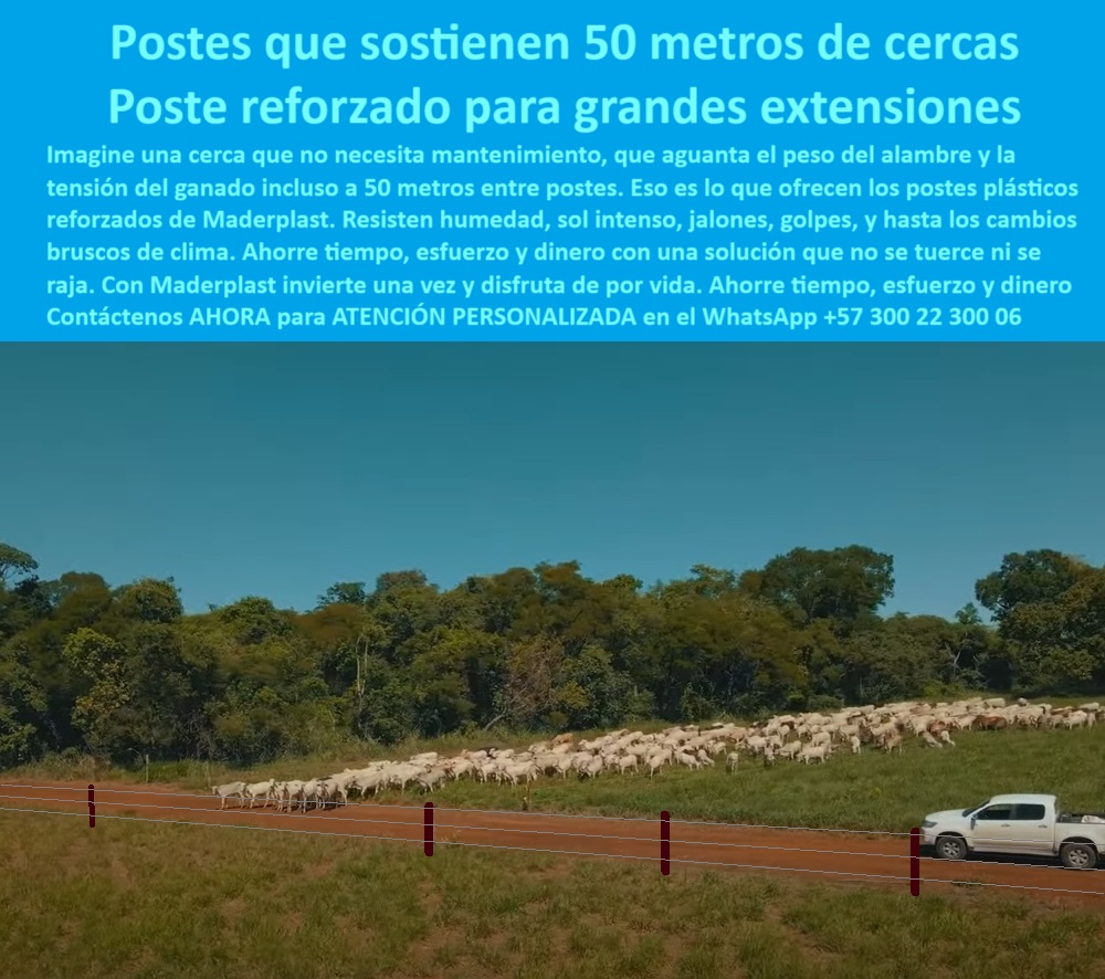 Poste Para Cerco Eléctrico Poste De Alambre Púa Distancia A 25 Mts Maderplast Cerca con postes técnicos en terreno plano y rural, - Cerca ganadera Maderplast sobre vía rural y sabana verde, - poste sin concreto para tensado de alambre, - ¿Qué poste no se tuerce ni se pudre?, - poste para terrenos difíciles sin refuerzos, - poste económico para dividir potreros, - ¿Qué poste sirve para distancias largas entre cercas?, - poste-reciclado-inteligente, - Postes ecológicos sin mantenimiento para distancias largas, - poste-plástico-ganadero, - Poste reciclado con tensión firme entre grandes extensiones, - poste ganadero a 50 metros sin caída, - poste-para-alambre-tensado, - poste para manejo de ganado en sabana, - ¿Dónde comprar postes ganaderos reforzados?, - poste fuerte para cercas eléctricas, - poste ecológico que no se oxida, - poste-para-zonas-rurales, - Postes visibles con alambre a tensión exacta Maderplast, - poste visible resistente junto a vía y ganado, - poste de polímero para alambre púa, - poste-sin-mantenimiento, - Poste para potrero largo sin rajarse ni torcerse, - poste plástico reforzado para ganado, - poste-sin-concreto-durable, - poste rural para cercas ganaderas extensas, - poste-de-50-metros, - poste de alta ingeniería ganadera, - poste-plástico-para-potreros, - poste estructural para campo abierto, - ¿Cuál es el mejor poste para cercas de 50 metros?, - poste firme sin rajaduras ni torsiones, - poste para tensado de alambre rural, - poste reciclado para extensión rural, - poste resistente a humedad y sol, - poste plástico reforzado para 50 metros de separación, - poste para cercas de 50 metros, - poste-para-cercas-largas, - poste plástico ideal para finca moderna, - Ganado caminando frente a postes plásticos resistentes, - poste plástico para finca de cría, - poste sostenible para cerramientos rurales, - poste antivandálico para cerca ganadera, - poste sin concreto para potrero grande, - poste Maderplast en zonas ganaderas amplias, - postes Maderplast para ganado en campo abierto, - poste para separación de ganado intensivo, - poste Maderplast sin mantenimiento, - La foto muestra una imagen real de una extensa cerca ganadera con postes plásticos Maderplast ubicados estratégicamente cada 50 metros. La escena, capturada en zona rural con sabana amplia y cielo despejado, resalta un sistema técnico de cercado que no se oxida, no se dobla y no se rompe. El poste Maderplast, alto y robusto, mantiene firme el alambre de púas, incluso con una manada de ganado caminando paralela a la vía. No requiere aisladores, ni refuerzos ni pintura. Es perfecto para terrenos planos o irregulares. Está diseñado para resistir el impacto del clima, los jalones del ganado y las condiciones más exigentes del campo. Este poste reciclado representa una alternativa sólida y estética al concreto o la madera. Su memoria plástica permite tensar sin deformarse. La instalación es rápida y duradera. Una sola inversión para olvidarse del mantenimiento por décadas. La innovación de Maderplast se refleja en cada metro de cerca recta, alineada y funcional., - Sistema de cercado ganadero sostenible en zona amplia, - Postes a 50 metros con alambre tenso sin deformaciones, - poste técnico para alambrado largo, - poste sin pintura con memoria plástica, - Poste plástico reforzado Maderplast con ganado en movimiento, - ¿Postes que aguanten alambre sin mantenimiento?, - postes-maderplast-reforzados-para-cercas-de-50-metros-rurales.jpg, - poste-maderplast-reforzado 0 tensado-de-alambre-con-poste-plástico, - postes-con-50-metros-de-separación, - Poste reforzado para tejido y púas en zona rural, - cercas ganaderas Finas Poste Para Cerco Eléctrico Poste De Alambre Púa Distancia A 25 Mts Maderplast 0 tensado de alambre con poste plástico postes con 50 metros de separación Poste reforzado para tejido y púas en zona rural cercas ganaderas Cerca con postes técnicos en terreno plano y rural, - Cerca ganadera Maderplast sobre vía rural y sabana verde, - poste sin concreto para tensado de alambre, - ¿Qué poste no se tuerce ni se pudre?, - poste para terrenos difíciles sin refuerzos, - poste económico para dividir potreros, - ¿Qué poste sirve para distancias largas entre cercas?, - poste-reciclado-inteligente, - Postes ecológicos sin mantenimiento para distancias largas, - poste-plástico-ganadero, - Poste reciclado con tensión firme entre grandes extensiones, - poste ganadero a 50 metros sin caída, - poste-para-alambre-tensado, - poste para manejo de ganado en sabana, - ¿Dónde comprar postes ganaderos reforzados?, - poste fuerte para cercas eléctricas, - poste ecológico que no se oxida, - poste-para-zonas-rurales, - Postes visibles con alambre a tensión exacta Maderplast, - poste visible resistente junto a vía y ganado, - poste de polímero para alambre púa, - poste-sin-mantenimiento, - Poste para potrero largo sin rajarse ni torcerse, - poste plástico reforzado para ganado, - poste-sin-concreto-durable, - poste rural para cercas ganaderas extensas, - poste-de-50-metros, - poste de alta ingeniería ganadera, - poste-plástico-para-potreros, - poste estructural para campo abierto, - ¿Cuál es el mejor poste para cercas de 50 metros?, - poste firme sin rajaduras ni torsiones, - poste para tensado de alambre rural, - poste reciclado para extensión rural, - poste resistente a humedad y sol, - poste plástico reforzado para 50 metros de separación, - poste para cercas de 50 metros, - poste-para-cercas-largas, - poste plástico ideal para finca moderna, - Ganado caminando frente a postes plásticos resistentes, - poste plástico para finca de cría, - poste sostenible para cerramientos rurales, - poste antivandálico para cerca ganadera, - poste sin concreto para potrero grande, - poste Maderplast en zonas ganaderas amplias, - postes Maderplast para ganado en campo abierto, - poste para separación de ganado intensivo, - poste Maderplast sin mantenimiento, - La foto muestra una imagen real de una extensa cerca ganadera con postes plásticos Maderplast ubicados estratégicamente cada 50 metros. La escena, capturada en zona rural con sabana amplia y cielo despejado, resalta un sistema técnico de cercado que no se oxida, no se dobla y no se rompe. El poste Maderplast, alto y robusto, mantiene firme el alambre de púas, incluso con una manada de ganado caminando paralela a la vía. No requiere aisladores, ni refuerzos ni pintura. Es perfecto para terrenos planos o irregulares. Está diseñado para resistir el impacto del clima, los jalones del ganado y las condiciones más exigentes del campo. Este poste reciclado representa una alternativa sólida y estética al concreto o la madera. Su memoria plástica permite tensar sin deformarse. La instalación es rápida y duradera. Una sola inversión para olvidarse del mantenimiento por décadas. La innovación de Maderplast se refleja en cada metro de cerca recta, alineada y funcional., - Sistema de cercado ganadero sostenible en zona amplia, - Postes a 50 metros con alambre tenso sin deformaciones, - poste técnico para alambrado largo, - poste sin pintura con memoria plástica, - Poste plástico reforzado Maderplast con ganado en movimiento, - ¿Postes que aguanten alambre sin mantenimiento?, - postes-maderplast-reforzados-para-cercas-de-50-metros-rurales.jpg, - poste-maderplast-reforzado Finas Poste Para Cerco Eléctrico Poste De Alambre Púa Distancia A 25 Mts Maderplast 0 tensado-de-alambre-con-poste-plástico, - postes-con-50-metros-de-separación, - Poste reforzado para tejido y púas en zona rural, - cercas ganaderas Finas