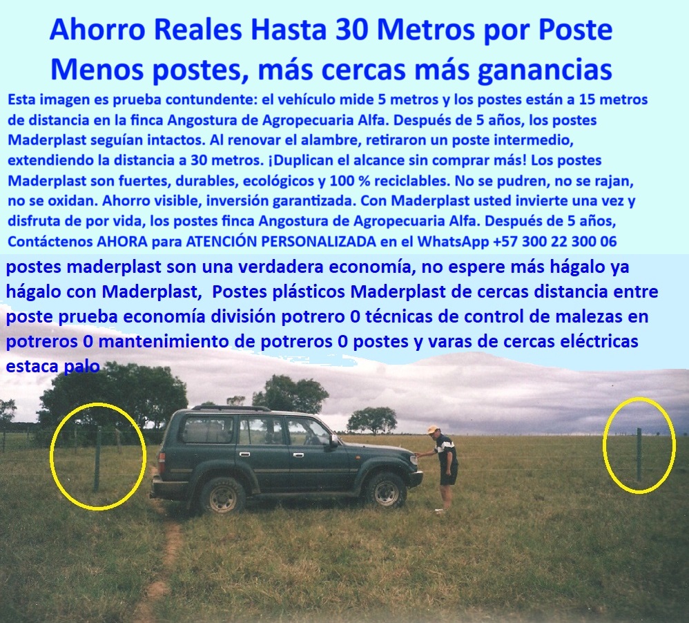 Postes Análisis Materiales Estudio Apu Precios Ventajas Beneficios Postes Maderplast Postes de color verde instalados en campo plano, - cercado ganadero económico sin comprometer seguridad, - Vehículo de referencia mide 5 metros entre postes, - poste-plastico-maderplast-distancia-30-metros-finca-angostura.jpg, - Imagen de potrero con postes plásticos separados, - Campo ganadero con instalación técnica comprobada, - poste para rotación de ganado sostenible, - poste sólido sin mantenimiento para clima húmedo, - poste-contra-humedad-y-golpes, - poste ideal para finca ganadera sostenible, - poste-plástico-ganadero-real, - La foto muestra una imagen real de la finca Angostura de Agropecuaria Alfa, donde un vehículo de 5 metros sirve como escala visual para evidenciar la distancia entre postes Maderplast: 15 metros inicialmente y 30 metros tras cinco años de prueba. Al renovar el alambre, el poste intermedio fue retirado, y la cerca siguió firme, probando la superioridad del diseño. Fabricados con polímero reciclado de alto desempeño, los postes Maderplast no se oxidan, no se parten y no necesitan pintura ni mantenimiento. Su resistencia estructural permite ampliar el alcance sin comprometer la seguridad del cercado, haciendo posible duplicar la distancia entre postes sin duplicar costos. Esta innovación reduce drásticamente el uso de materiales y mano de obra. Con Maderplast, se logra un sistema de cerramiento eficiente, sostenible y probado en campo real, con beneficios tangibles a corto y largo plazo., - poste que no requiere reemplazos en 10 años, - ahorro comprobado con postes Maderplast en potrero, - poste-de-alto-rendimiento-rural, - ¿Cómo ahorrar dinero instalando menos postes en finca?, - poste plástico para ahorro en división de potreros, - poste-convalidación-en-campo, - poste-polímero-resistente, - poste ideal para líneas rectas sin pandeo, - ¿Qué poste me permite instalar cercas cada 30 metros?, - poste-para-cercas-económicas, - Postes plásticos con demostración comparativa efectiva, - poste de polímero con validación en campo, - ¿Cómo hacer más metros de cerca sin gastar más?, - Evidencia visual de economía en distancia entre cercas, - poste plástico que sustituye dos postes tradicionales, - poste que duplica cobertura sin afectar resistencia, - ¿Qué poste sirve para dividir potreros con bajo costo?, - poste plástico con memoria de forma y tensión, - poste-de-30-metros-entre-distancias, - poste plástico económico para instalar cada 30 metros, - poste para ganadería que evita sobrecostos, - poste para cercas amplias sin aisladores, - validación de poste reciclado en finca real, - Postes firmes sin inclinación ni deformación visible, - poste-para-finca-extensiva, - poste reciclado que resiste peso y jalones, - poste-sin-reemplazo-en-10-años, - ¿Cuál es el mejor poste sin mantenimiento para potreros?, - sistema de cercas rurales con menor cantidad de postes, - poste reutilizable que no se deforma, - poste que ahorra varillas y mano de obra, - poste que permite 30 metros entre cercas ganaderas, - Postes espaciados visualmente a 30 metros exactos, - poste ganadero que reduce la inversión inicial, - poste con garantía real de economía comprobada, - poste-para-manejo-de-potreros, - poste de alta ingeniería sin concreto ni pintura, - poste para maximizar la distancia sin perder firmeza, - poste para expansión de cercas sin obras adicionales, - poste para fincas con potrero intensivo, - poste para control de maleza sin químicos, - Cerca ganadera sin postes intermedios adicionales, - poste para separación eficiente de áreas rurales, - Postes reciclados que mantienen alineación sin tensión, - poste estructural probado en campo abierto 0 poste plástico sin mantenimiento, - delimitador plástico sólido, - cercado para zonas con humedad permanente, - poste de polímero reciclado sólido Postes Análisis Materiales Estudio Apu Precios Ventajas Beneficios Postes Maderplast 0 poste plástico sin mantenimiento delimitador plástico sólido cercado para zonas con humedad permanente poste de polímero reciclado sólido Postes de color verde instalados en campo plano, - cercado ganadero económico sin comprometer seguridad, - Vehículo de referencia mide 5 metros entre postes, - poste-plastico-maderplast-distancia-30-metros-finca-angostura.jpg, - Imagen de potrero con postes plásticos separados, - Campo ganadero con instalación técnica comprobada, - poste para rotación de ganado sostenible, - poste sólido sin mantenimiento para clima húmedo, - poste-contra-humedad-y-golpes, - poste ideal para finca ganadera sostenible, - poste-plástico-ganadero-real, - La foto muestra una imagen real de la finca Angostura de Agropecuaria Alfa, donde un vehículo de 5 metros sirve como escala visual para evidenciar la distancia entre postes Maderplast: 15 metros inicialmente y 30 metros tras cinco años de prueba. Al renovar el alambre, el poste intermedio fue retirado, y la cerca siguió firme, probando la superioridad del diseño. Fabricados con polímero reciclado de alto desempeño, los postes Maderplast no se oxidan, no se parten y no necesitan pintura ni mantenimiento. Su resistencia estructural permite ampliar el alcance sin comprometer la seguridad del cercado, haciendo posible duplicar la distancia entre postes sin duplicar costos. Esta innovación reduce drásticamente el uso de materiales y mano de obra. Con Maderplast, se logra un sistema de cerramiento eficiente, sostenible y probado en campo real, con beneficios tangibles a corto y largo plazo., - poste que no requiere reemplazos en 10 años, - ahorro comprobado con postes Maderplast en potrero, - poste-de-alto-rendimiento-rural, - ¿Cómo ahorrar dinero instalando menos postes en finca?, - poste plástico para ahorro en división de potreros, - poste-convalidación-en-campo, - poste-polímero-resistente, - poste ideal para líneas rectas sin pandeo, - ¿Qué poste me permite instalar cercas cada 30 metros?, - poste-para-cercas-económicas, - Postes plásticos con demostración comparativa efectiva, - poste de polímero con validación en campo, - ¿Cómo hacer más metros de cerca sin gastar más?, - Evidencia visual de economía en distancia entre cercas, - poste plástico que sustituye dos postes tradicionales, - poste que duplica cobertura sin afectar resistencia, - ¿Qué poste sirve para dividir potreros con bajo costo?, - poste plástico con memoria de forma y tensión, - poste-de-30-metros-entre-distancias, - poste plástico económico para instalar cada 30 metros, - poste para ganadería que evita sobrecostos, - poste para cercas amplias sin aisladores, - validación de poste reciclado en finca real, - Postes firmes sin inclinación ni deformación visible, - poste-para-finca-extensiva, - poste reciclado que resiste peso y jalones, - poste-sin-reemplazo-en-10-años, - ¿Cuál es el mejor poste sin mantenimiento para potreros?, - sistema de cercas rurales con menor cantidad de postes, - poste reutilizable que no se deforma, - poste que ahorra varillas y mano de obra, - poste que permite 30 metros entre cercas ganaderas, - Postes espaciados visualmente a 30 metros exactos, - poste ganadero que reduce la inversión inicial, - poste con garantía real de economía comprobada, - poste-para-manejo-de-potreros, - poste de alta ingeniería sin concreto ni pintura, - poste para maximizar la distancia sin perder firmeza, - poste para expansión de cercas sin obras adicionales, - poste para fincas con potrero intensivo, - poste para control de maleza sin químicos, - Cerca ganadera sin postes intermedios adicionales, - poste para separación eficiente de áreas rurales, - Postes reciclados que mantienen alineación sin tensión, - poste estructural probado en campo abierto 0 Postes Análisis Materiales Estudio Apu Precios Ventajas Beneficios Postes Maderplast 0 poste plástico sin mantenimiento, - delimitador plástico sólido, - cercado para zonas con humedad permanente, - poste de polímero reciclado sólido