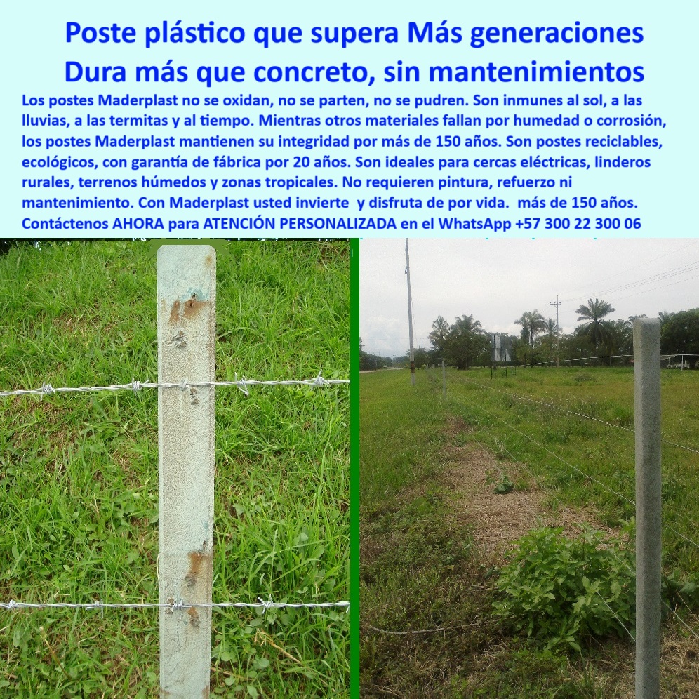Postes Análisis Materiales Estudio Apu Precios Ventajas Beneficios Postes Maderplast poste seguro para cercas de protección agrícola, - poste-plástico-ecológico, - poste que no se oxida ni con lluvia ni con sol, - poste para control de potreros sin intervención, - La foto muestra una imagen real comparativa de dos postes plásticos Maderplast instalados en terreno tropical con alta humedad. A la izquierda, un poste antiguo sin fracturas visibles, oxidación o desgaste, y a la derecha una instalación en uso actual que sigue firme y alineada después de años de intemperie. Estas cercas eléctricas están sostenidas por postes que no requieren pintura, no se parten y no se oxidan, resistiendo el paso del tiempo sin mantenimiento. La tecnología Maderplast en polímeros reciclados estructurales ha demostrado que es superior a la madera y al concreto, incluso en condiciones exigentes. Son postes ideales para linderos rurales, divisiones agrícolas, terrenos húmedos y zonas tropicales donde la durabilidad y la seguridad importan. Fabricados para durar más de 150 años, los postes Maderplast aseguran eficiencia operativa y beneficios económicos al eliminar reemplazos. La elección perfecta para productores que buscan sustentabilidad real y resistencia comprobada., - Campo abierto con cerca técnica plástica instalada, - Vista doble de poste antiguo y poste moderno comparado, - poste de tecnología reciclada para fincas modernas, - poste para ganadería sin químicos ni aisladores, - poste Maderplast con duración superior al concreto, - poste plástico de larga duración garantizada, - Postes en hilera a la distancia bajo clima nublado, - poste-para-cercas-sin-mantenimiento, - ¿Qué poste es mejor que el concreto para clima húmedo?, - Sistema de cercas con alambre tensado y poste ecológico, - poste que ahorra costos de reemplazo, - ¿Dónde venden postes para cercas sin mantenimiento?, - poste libre de hongos y termitas, - poste reciclado que resiste lluvias intensas y sol fuerte, - ¿Poste plástico que dure más de 100 años?, - poste-liviano-sin-pudrición, - ¿Postes reciclables que no necesitan pintura?, - poste que no se raja ni parte con el tiempo, - poste técnico para sistemas de cercado ecológico, - Poste verde grisáceo sin señales de deterioro, - poste-reciclado-de-larga-duración, - poste sin corrosión para terrenos húmedos, - poste firme para dividir zonas de pastura intensiva, - poste dieléctrico sin aisladores para cerca eléctrica, - poste que no necesita refuerzo ni pintura, - cerca eléctrica con postes plásticos sin aislador, - poste que dura más de 150 años, - poste-tecnológico-para-seguridad, - poste para ganadería intensiva en clima tropical, - ¿Cuál es el poste que no se oxida ni se parte?, - Alambre de púas tensado entre postes durables, - poste con instalación directa sin concreto, - poste-para-división-de-potreros, - poste-electrico-dieléctrico, - poste de alta resistencia para lindero ganadero, - Poste plástico Maderplast firme sobre pasto tropical húmedo, - poste ecológico que resista humedad y sol, - poste robusto para zonas de difícil acceso, - poste-durable-para-fincas, - Poste firme y sin inclinación en zona agrícola, - poste sin mantenimiento para cercas rurales eléctricas, - poste para cerramiento técnico y seguro, - poste de polímero estructural para cercas permanentes, - poste-sin-pintura-ni-refuerzos, - poste sostenible para divisiones agrícolas durables, - poste-plástico-vs-concreto-húmedo-durable-maderplast.jpg, - Poste con alambre sin aislador en terreno rural plano, - poste-resistente-al-clima-tropical, - Contraste de cercas con humedad y sin desgaste, - poste ecológico que no se pudre ni se oxida, - poste plástico para clima extremo y zonas tropicales, - poste Maderplast con garantía y cero oxidación 0 postes cerca plástica resistente al sol, - Instalación de cerca eléctrica con poste plástico ecológico, - postes técnicos para cercas de seguridad Postes Análisis Materiales Estudio Apu Precios Ventajas Beneficios Postes Maderplast 0 postes cerca plástica resistente al sol Instalación de cerca eléctrica con poste plástico ecológico postes técnicos para cercas de seguridad poste seguro para cercas de protección agrícola, - poste-plástico-ecológico, - poste que no se oxida ni con lluvia ni con sol, - poste para control de potreros sin intervención, - La foto muestra una imagen real comparativa de dos postes plásticos Maderplast instalados en terreno tropical con alta humedad. A la izquierda, un poste antiguo sin fracturas visibles, oxidación o desgaste, y a la derecha una instalación en uso actual que sigue firme y alineada después de años de intemperie. Estas cercas eléctricas están sostenidas por postes que no requieren pintura, no se parten y no se oxidan, resistiendo el paso del tiempo sin mantenimiento. La tecnología Maderplast en polímeros reciclados estructurales ha demostrado que es superior a la madera y al concreto, incluso en condiciones exigentes. Son postes ideales para linderos rurales, divisiones agrícolas, terrenos húmedos y zonas tropicales donde la durabilidad y la seguridad importan. Fabricados para durar más de 150 años, los postes Maderplast aseguran eficiencia operativa y beneficios económicos al eliminar reemplazos. La elección perfecta para productores que buscan sustentabilidad real y resistencia comprobada., - Campo abierto con cerca técnica plástica instalada, - Vista doble de poste antiguo y poste moderno comparado, - poste de tecnología reciclada para fincas modernas, - poste para ganadería sin químicos ni aisladores, - poste Maderplast con duración superior al concreto, - poste plástico de larga duración garantizada, - Postes en hilera a la distancia bajo clima nublado, - poste-para-cercas-sin-mantenimiento, - ¿Qué poste es mejor que el concreto para clima húmedo?, - Sistema de cercas con alambre tensado y poste ecológico, - poste que ahorra costos de reemplazo, - ¿Dónde venden postes para cercas sin mantenimiento?, - poste libre de hongos y termitas, - poste reciclado que resiste lluvias intensas y sol fuerte, - ¿Poste plástico que dure más de 100 años?, - poste-liviano-sin-pudrición, - ¿Postes reciclables que no necesitan pintura?, - poste que no se raja ni parte con el tiempo, - poste técnico para sistemas de cercado ecológico, - Poste verde grisáceo sin señales de deterioro, - poste-reciclado-de-larga-duración, - poste sin corrosión para terrenos húmedos, - poste firme para dividir zonas de pastura intensiva, - poste dieléctrico sin aisladores para cerca eléctrica, - poste que no necesita refuerzo ni pintura, - cerca eléctrica con postes plásticos sin aislador, - poste que dura más de 150 años, - poste-tecnológico-para-seguridad, - poste para ganadería intensiva en clima tropical, - ¿Cuál es el poste que no se oxida ni se parte?, - Alambre de púas tensado entre postes durables, - poste con instalación directa sin concreto, - poste-para-división-de-potreros, - poste-electrico-dieléctrico, - poste de alta resistencia para lindero ganadero, - Poste plástico Maderplast firme sobre pasto tropical húmedo, - poste ecológico que resista humedad y sol, - poste robusto para zonas de difícil acceso, - poste-durable-para-fincas, - Poste firme y sin inclinación en zona agrícola, - poste sin mantenimiento para cercas rurales eléctricas, - poste para cerramiento técnico y seguro, - poste de polímero estructural para cercas permanentes, - poste-sin-pintura-ni-refuerzos, - poste sostenible para divisiones agrícolas durables, - poste-plástico-vs-concreto-húmedo-durable-maderplast.jpg, - Poste con alambre sin aislador en terreno rural plano, - poste-resistente-al-clima-tropical, - Contraste de cercas con humedad y sin desgaste, - poste ecológico que no se pudre ni se oxida, - poste plástico para clima extremo y zonas tropicales, - poste Maderplast con garantía y cero oxidación 0 Postes Análisis Materiales Estudio Apu Precios Ventajas Beneficios Postes Maderplast 0 postes cerca plástica resistente al sol, - Instalación de cerca eléctrica con poste plástico ecológico, - postes técnicos para cercas de seguridad