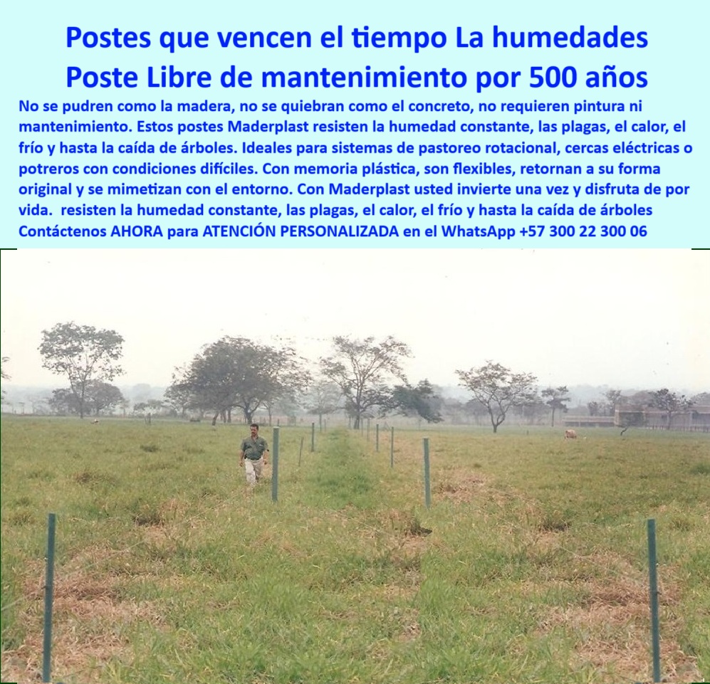 Postes Análisis Precios Económicos Poste Bajo Costo Estudio Precios APU Maderplast poste plástico con durabilidad comprobada, - postes plásticos que sobreviven caídas de árboles, - cómo dividir fincas con postes sin cemento, - ¿Cuál poste no necesita pintura ni mantenimiento?, - Postes_Resistentes_Humedad_30_Años_Potreros_Maderplast_Meta_0.jpg, - cerca ganadera ecológica de larga duración, - ¿Qué cerca puedo usar sin concreto ni madera?, - Cercado a largo plazo sin mantenimiento en Colombia, - qué tipo de poste no necesita pintura ni refuerzo, - sistema de cerca permanente sin roturas ni fallas, - sistema-de-rotación-ganadera, - Postes instalados en pradera húmeda hace más de 30 años, - sustituto ecológico de postes de madera para fincas, - cómo evitar la pudrición en cercas rurales, - soluciones para ganado en suelos blandos o encharcados, - instalación de postes ecológicos sin herramientas pesadas, - cercas ganaderas hechas para durar generaciones, - postes sin oxidación ni grietas por rayos UV, - postes plásticos que soportan clima extremo y animales, - Solución ecológica para potreros sin pintar ni reforzar, - ¿Qué poste aguanta humedad y no se pudre?, - postes de bajo costo con memoria plástica estructural, - Sistema de cerca verde, limpio, duradero y flexible, - Ganadero camina entre postes intactos en Villavicencio Meta, - Pradera dividida con postes plásticos sin oxidación, - tecnología ganadera colombiana libre de mantenimiento, - postes resistentes a rayos UV y hongos, - cercado-liviano-para-suelos-blandos, - postes para praderas húmedas que no se pudren, - inversión ganadera que no se reemplaza cada 5 años, - dónde comprar postes plásticos durables en Colombia, - postes-sin-pintura-ni-pudrición, - La foto muestra una imagen real del ganadero Ricardo Castañeda en Villavicencio, Meta, caminando sobre una pradera húmeda dividida hace más de 30 años con postes plásticos Maderplast. Fue tomada cerca del kilómetro 45, vía Acacías, antes del peaje y junto a la cárcel de Villavicencio. Estos postes siguen de pie, verdes, firmes, sin pintura, sin grietas, sin moho. Resisten la humedad, el calor, los rayos UV, los hongos y hasta la caída de ramas. Gracias a su memoria plástica, recuperan su forma ante golpes y no requieren aisladores ni soporte adicional. Son ideales para ganadería intensiva y sistemas de pastoreo rotacional. Con Maderplast, la inversión se hace una sola vez y se olvida el mantenimiento para siempre. Maderplast, tecnología ecológica que transforma el campo colombiano., - innovación-en-cercas-rurales, - ¿Dónde comprar postes durables para ganado?, - postes resistentes a humedad y plagas para potreros, - Instalación rural sin maquinaria pesada ni albañilería, - cercas ganaderas que duran más de 30 años sin pintar, - cerca-de-potreros-sin-mantenimiento, - ¿Qué poste resiste plagas y lluvias intensas?, - tecnología-para-clima-extremo, - cercas para rotación ganadera en terrenos difíciles, - alternativa sin madera ni cemento para cercas, - postes-resistentes-a-la-humedad, - inversión rentable en postes de polímero reciclado, - alternativa plástica a postes de concreto en zonas húmedas, - mejores postes ganaderos para clima húmedo, - Poste plástico se mantiene firme tras décadas de uso, - sistemas de división de potreros sin mantenimiento, - memoria-plástica-en-postes, - inversión-duradera-en-potreros, - postes plásticos confiables para pastoreo rotacional, - Evidencia técnica de postes en uso real comprobado, - Línea de postes sin concreto en terreno ganadero húmedo, - estructura para división de potreros en Meta Colombia, - poste-sin-madera-ni-cemento, - tecnología para cercas eléctricas sin aisladores0 Dónde comprar postes plásticos durables en Colombia, - Soluciones sin madera para cercas de ganado, - Pradera ganadera dividida con postes resistente Postes Análisis Precios Económicos Poste Bajo Costo Estudio Precios APU Maderplast 0 Dónde comprar postes plásticos durables en Colombia Soluciones sin madera para cercas de ganado Pradera ganadera dividida con postes resistente poste plástico con durabilidad comprobada, - postes plásticos que sobreviven caídas de árboles, - cómo dividir fincas con postes sin cemento, - ¿Cuál poste no necesita pintura ni mantenimiento?, - Postes_Resistentes_Humedad_30_Años_Potreros_Maderplast_Meta_0.jpg, - cerca ganadera ecológica de larga duración, - ¿Qué cerca puedo usar sin concreto ni madera?, - Cercado a largo plazo sin mantenimiento en Colombia, - qué tipo de poste no necesita pintura ni refuerzo, - sistema de cerca permanente sin roturas ni fallas, - sistema-de-rotación-ganadera, - Postes instalados en pradera húmeda hace más de 30 años, - sustituto ecológico de postes de madera para fincas, - cómo evitar la pudrición en cercas rurales, - soluciones para ganado en suelos blandos o encharcados, - instalación de postes ecológicos sin herramientas pesadas, - cercas ganaderas hechas para durar generaciones, - postes sin oxidación ni grietas por rayos UV, - postes plásticos que soportan clima extremo y animales, - Solución ecológica para potreros sin pintar ni reforzar, - ¿Qué poste aguanta humedad y no se pudre?, - postes de bajo costo con memoria plástica estructural, - Sistema de cerca verde, limpio, duradero y flexible, - Ganadero camina entre postes intactos en Villavicencio Meta, - Pradera dividida con postes plásticos sin oxidación, - tecnología ganadera colombiana libre de mantenimiento, - postes resistentes a rayos UV y hongos, - cercado-liviano-para-suelos-blandos, - postes para praderas húmedas que no se pudren, - inversión ganadera que no se reemplaza cada 5 años, - dónde comprar postes plásticos durables en Colombia, - postes-sin-pintura-ni-pudrición, - La foto muestra una imagen real del ganadero Ricardo Castañeda en Villavicencio, Meta, caminando sobre una pradera húmeda dividida hace más de 30 años con postes plásticos Maderplast. Fue tomada cerca del kilómetro 45, vía Acacías, antes del peaje y junto a la cárcel de Villavicencio. Estos postes siguen de pie, verdes, firmes, sin pintura, sin grietas, sin moho. Resisten la humedad, el calor, los rayos UV, los hongos y hasta la caída de ramas. Gracias a su memoria plástica, recuperan su forma ante golpes y no requieren aisladores ni soporte adicional. Son ideales para ganadería intensiva y sistemas de pastoreo rotacional. Con Maderplast, la inversión se hace una sola vez y se olvida el mantenimiento para siempre. Maderplast, tecnología ecológica que transforma el campo colombiano., - innovación-en-cercas-rurales, - ¿Dónde comprar postes durables para ganado?, - postes resistentes a humedad y plagas para potreros, - Instalación rural sin maquinaria pesada ni albañilería, - cercas ganaderas que duran más de 30 años sin pintar, - cerca-de-potreros-sin-mantenimiento, - ¿Qué poste resiste plagas y lluvias intensas?, - tecnología-para-clima-extremo, - cercas para rotación ganadera en terrenos difíciles, - alternativa sin madera ni cemento para cercas, - postes-resistentes-a-la-humedad, - inversión rentable en postes de polímero reciclado, - alternativa plástica a postes de concreto en zonas húmedas, - mejores postes ganaderos para clima húmedo, - Poste plástico se mantiene firme tras décadas de uso, - sistemas de división de potreros sin mantenimiento, - memoria-plástica-en-postes, - inversión-duradera-en-potreros, - postes plásticos confiables para pastoreo rotacional, - Evidencia técnica de postes en uso real comprobado, - Línea de postes sin concreto en terreno ganadero húmedo, - estructura para división de potreros en Meta Colombia, - poste-sin-madera-ni-cemento, - tecnología para cercas eléctricas sin aisladores 0 Postes Análisis Precios Económicos Poste Bajo Costo Estudio Precios APU Maderplast 0 Dónde comprar postes plásticos durables en Colombia, - Soluciones sin madera para cercas de ganado, - Pradera ganadera dividida con postes resistente