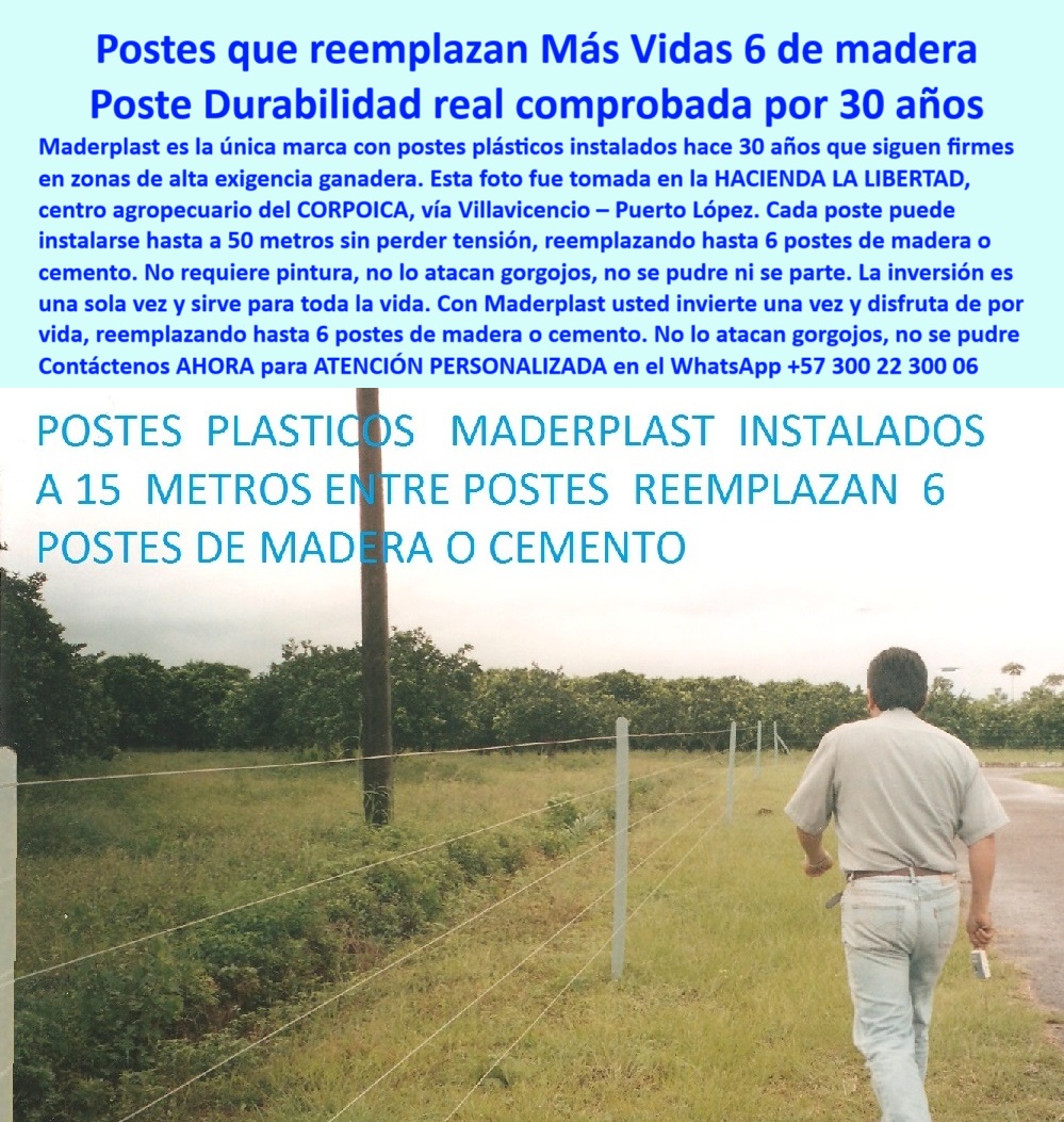 Postes Análisis Precios Económicos Poste Bajo Costo Estudio Precios APU Maderplast cómo construir una cerca con menos postes sin perder firmeza, - cercado económico con postes resistentes al clima, - ¿Dónde comprar postes que duran más de 30 años?, - La foto muestra una imagen real tomada en la Hacienda La Libertad, centro agropecuario antes Corpoica, vía Villavicencio - Puerto López. El ganadero Fernando Bamón, proveniente de Panamá, vino personalmente a verificar si realmente los postes Maderplast podían instalarse a 25 metros sin perder firmeza. Lo que vio superó sus expectativas: una cerca firme, sin aisladores, sin mantenimiento, ni un solo poste suelto o dañado tras 30 años de uso continuo. Cada poste reemplaza hasta 6 de madera o cemento, sin pintura ni riesgo de plagas. Este sistema estructural de Maderplast demuestra que menos es más cuando se tiene tecnología de verdad. Gracias a la innovación colombiana, hoy Fernando disfruta de potreros extensos en Panamá con costos reducidos y seguridad total. Maderplast convierte la incredulidad en fidelidad., - postes que aguanta sin quebrarse a 25 metros, - solución para potreros sin cambiar postes por décadas, - Ganadero observa instalación técnica con 30 años de uso, - solución definitiva para potreros extensos sin aisladores, - cómo reducir costos de cercado sin perder calidad, - Testimonio internacional con imagen real en potrero, - testimonios-de-clientes-en-Panamá, - Instalación de postes verdes sin soporte adicional, - Cerco plástico visible junto a paso peatonal y vegetal, - cerca-económica-con-larga-distancia, - ¿Qué cerca es más económica sin perder calidad?, - cerca ganadera técnica sin aisladores, - postes que aguantan tensión en suelos difíciles, - ahorro-en-potreros-con-postes-largos, - Línea recta de postes sin concreto ni deformación, - ahorro en cercado ganadero con plásticos reciclados, - método rentable de cercado para fincas ganaderas, - postes resistentes a 25 metros entre sí, - sistema-eficiente-de-cercado-ganadero, - cerca ganadera ecológica sin concreto ni madera, - ¿Cuál es la mejor alternativa al poste de madera?, - Poste instalado a 25 metros en potrero extenso sin fallos, - Cerca resistente sin pintura con poste ecológico, - postes de alta ingeniería para pastoreo a gran escala, - cómo alargar distancia entre postes y ahorrar dinero, - sistema de cercado con mínima cantidad de postes, - instalación eficiente de postes con separación larga, - Reemplazo de postes convencionales con una sola unidad, - inversión ganadera rentable en cercas de alta duración, - inversión-inteligente-en-cercas, - cerca ganadera con diseño estructural probado, - Cliente panameño verifica distancia de postes sin quebrar, - poste-plástico-rural-de-alta-duración, - sistema de postes probado con 30 años de garantía, - alternativa moderna a postes tradicionales de concreto, - reducción de postes en proyectos de pastoreo extensivo, - ¿Qué postes puedo poner a 25 metros sin concreto?, - Cerca ganadera económica con postes plásticos Maderplast, - postes plásticos que reemplazan 6 de madera o cemento, - innovación en cercado rural económico y eficiente, - tecnología para dividir potreros con pocos materiales, - poste-contra-plagas-y-humedad, - ¿Cómo hacer una cerca con menos postes y más firmeza?, - poste-de-larga-vida-útil-sin-mantenimiento, - postes-que-reemplazan-la-madera, - postes para cercas largas sin concreto ni mantenimiento, - postes duraderos para potreros de grandes extensiones, - guía para hacer cercas eficientes en tiempo y costo, - postes-a-25-metros-sin-concreto, - postes para zonas rurales sin pudrición ni oxidación, - cómo separar postes a 25 metros sin perder tensión, - Postes_Plásticos_A_25_Metros_Reemplazan_6_De_Madera_Maderplast_0.jpg, - cercas duraderas sin concreto ni madera 0 cercas con postes durables sin concreto, - Cómo construir una cerca con menos postes, Maderplast es la solución, - separación entre postes de potrero Postes Análisis Precios Económicos Poste Bajo Costo Estudio Precios APU Maderplast 0 cercas con postes durables sin concreto Cómo construir una cerca con menos postes Maderplast es la solución separación entre postes de potrero cómo construir una cerca con menos postes sin perder firmeza, - cercado económico con postes resistentes al clima, - ¿Dónde comprar postes que duran más de 30 años?, - La foto muestra una imagen real tomada en la Hacienda La Libertad, centro agropecuario antes Corpoica, vía Villavicencio - Puerto López. El ganadero Fernando Bamón, proveniente de Panamá, vino personalmente a verificar si realmente los postes Maderplast podían instalarse a 25 metros sin perder firmeza. Lo que vio superó sus expectativas: una cerca firme, sin aisladores, sin mantenimiento, ni un solo poste suelto o dañado tras 30 años de uso continuo. Cada poste reemplaza hasta 6 de madera o cemento, sin pintura ni riesgo de plagas. Este sistema estructural de Maderplast demuestra que menos es más cuando se tiene tecnología de verdad. Gracias a la innovación colombiana, hoy Fernando disfruta de potreros extensos en Panamá con costos reducidos y seguridad total. Maderplast convierte la incredulidad en fidelidad., - postes que aguanta sin quebrarse a 25 metros, - solución para potreros sin cambiar postes por décadas, - Ganadero observa instalación técnica con 30 años de uso, - solución definitiva para potreros extensos sin aisladores, - cómo reducir costos de cercado sin perder calidad, - Testimonio internacional con imagen real en potrero, - testimonios-de-clientes-en-Panamá, - Instalación de postes verdes sin soporte adicional, - Cerco plástico visible junto a paso peatonal y vegetal, - cerca-económica-con-larga-distancia, - ¿Qué cerca es más económica sin perder calidad?, - cerca ganadera técnica sin aisladores, - postes que aguantan tensión en suelos difíciles, - ahorro-en-potreros-con-postes-largos, - Línea recta de postes sin concreto ni deformación, - ahorro en cercado ganadero con plásticos reciclados, - método rentable de cercado para fincas ganaderas, - postes resistentes a 25 metros entre sí, - sistema-eficiente-de-cercado-ganadero, - cerca ganadera ecológica sin concreto ni madera, - ¿Cuál es la mejor alternativa al poste de madera?, - Poste instalado a 25 metros en potrero extenso sin fallos, - Cerca resistente sin pintura con poste ecológico, - postes de alta ingeniería para pastoreo a gran escala, - cómo alargar distancia entre postes y ahorrar dinero, - sistema de cercado con mínima cantidad de postes, - instalación eficiente de postes con separación larga, - Reemplazo de postes convencionales con una sola unidad, - inversión ganadera rentable en cercas de alta duración, - inversión-inteligente-en-cercas, - cerca ganadera con diseño estructural probado, - Cliente panameño verifica distancia de postes sin quebrar, - poste-plástico-rural-de-alta-duración, - sistema de postes probado con 30 años de garantía, - alternativa moderna a postes tradicionales de concreto, - reducción de postes en proyectos de pastoreo extensivo, - ¿Qué postes puedo poner a 25 metros sin concreto?, - Cerca ganadera económica con postes plásticos Maderplast, - postes plásticos que reemplazan 6 de madera o cemento, - innovación en cercado rural económico y eficiente, - tecnología para dividir potreros con pocos materiales, - poste-contra-plagas-y-humedad, - ¿Cómo hacer una cerca con menos postes y más firmeza?, - poste-de-larga-vida-útil-sin-mantenimiento, - postes-que-reemplazan-la-madera, - postes para cercas largas sin concreto ni mantenimiento, - postes duraderos para potreros de grandes extensiones, - guía para hacer cercas eficientes en tiempo y costo, - postes-a-25-metros-sin-concreto, - postes para zonas rurales sin pudrición ni oxidación, - cómo separar postes a 25 metros sin perder tensión, - Postes_Plásticos_A_25_Metros_Reemplazan_6_De_Madera_Maderplast_0.jpg, - cercas duraderas sin concreto ni madera Postes Análisis Precios Económicos Poste Bajo Costo Estudio Precios APU Maderplast 0 cercas con postes durables sin concreto, - Cómo construir una cerca con menos postes, Maderplast es la solución, - separación entre postes de potrero