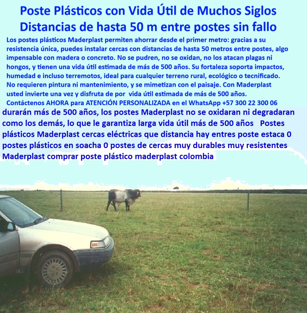 Postes Análisis Precios Económicos Poste Bajo Costo Estudio Precios APU Maderplast ¿Qué poste dura más de 30 años en campo?, - sistema de cercado sin óxido ni desgaste, - Solución plástica contra el desgaste del concreto, - instalación de cercas con menos postes más economía, - Ahorro visualizado con menos postes por hectárea, - sistema de división agrícola con mínimo impacto ambiental, - postes-reciclados-de-polímero, - ¿Qué distancia puede haber entre postes de cerca?, - La foto muestra una imagen real tomada en la finca del difunto don Víctor Carranza, en los Llanos Orientales, Villavicencio, Colombia. En ella se observa un automóvil estacionado entre postes plásticos Maderplast con una separación de casi 50 metros, sirviendo como referencia de escala visual. Esta configuración permite ahorrar postes sin comprometer la tensión del alambre ni la seguridad del ganado. Los postes Maderplast no se oxidan, no se parten ni se pudren; están hechos de polímero reciclado estructural que soporta impactos, humedad, calor y el paso del tiempo. Su vida útil estimada es de más de 500 años, sin pintura, sin mantenimiento y con memoria plástica. Esta solución permite instalaciones rápidas, duraderas y sostenibles, ideales para pastoreo rotacional, cercas eléctricas o proyectos rurales de gran escala. Con Maderplast, invierte una vez y olvídate de reemplazos. Maderplast es futuro, resistencia y ahorro rural., - Instalación de largo alcance sin desgaste visible, - cercado para ganado en terrenos blandos y encharcados, - sustituto de madera para cercas ganaderas intensivas, - cercas-a-50-metros-entre-postes, - poste-plástico-de-larga-duración, - Sistema de cercas sin madera en hacienda ganadera, - tecnología rural sin mantenimiento para 500 años, - postes plásticos instalados a 50 metros, - Campo plano con cercado de poste reciclado sin concreto, - postes-para-potreros-extensos, - inversión en postes que no requieren pintura, - cercas eléctricas rurales a 50 metros entre postes, - postes-durables-para-ganado, - cerca-sin-madera-ni-cemento, - Fotografía tomada en los Llanos, pradera húmeda con ganado, - solución ecológica para cercas rurales, - postes sin hierro ni cemento para larga vida útil, - poste para cercado sin mantenimiento por siglos, - solución definitiva para cerramientos sin reemplazo, - postes resistentes al clima y al paso del ganado, - postes rurales para zonas húmedas y tropicales, - Auto sirve como escala para medir 50 metros entre postes, - tecnología-rural-sin-mantenimiento, - alternativa-ecológica-a-la-madera, - soluciones-de-cercado-sostenible, - postes para potreros en los Llanos Orientales, - ahorro en instalación de cercas ganaderas durables, - ¿Cuál es la mejor cerca sin mantenimiento?, - Cerca rural sin oxidación ni refuerzos en campo abierto, - cerca ganadera sin cemento ni madera, - postes plásticos para cerca de larga distancia sin fallos, - cercado ganadero ecológico sin concreto ni madera, - solución para proyectos sostenibles sin tala de árboles, - postes con vida útil estimada de 500 años, - cercas modernas para haciendas de ganadería extensiva, - poste plástico que reemplaza al concreto, - poste que resiste impacto, calor y plagas sin fallas, - cómo dividir potreros con menos postes, - ¿Qué tipo de cerca necesita menos postes?, - poste para finca con vida útil superior a 100 años, - Tecnología Maderplast usada en división de potreros, - cercado económico con postes de polímero reciclado, - Postes_Plastico_50_Metros_Entre_Postes_Villavicencio_Maderplast_0.jpg, - poste ecológico con memoria plástica estructural, - ¿Dónde comprar postes que no se oxidan?, - Postes plásticos de cerca alineados a larga distancia, - inversión-inteligente-en-cercas, - cerca eléctrica profesional sin aisladores externos 0 módulo de cerca ecológica, - cerca eléctrica plástico rural, - alternativa cultivo-tecnificado-con-cercas, - postes cerca en proyectos sostenibles, 0 Postes Análisis Precios Económicos Poste Bajo Costo Estudio Precios APU Maderplast 0 módulo de cerca ecológica cerca eléctrica plástico rural alternativa cultivo tecnificado con cercas postes cerca en proyectos sostenibles ¿Qué poste dura más de 30 años en campo?, - sistema de cercado sin óxido ni desgaste, - Solución plástica contra el desgaste del concreto, - instalación de cercas con menos postes más economía, - Ahorro visualizado con menos postes por hectárea, - sistema de división agrícola con mínimo impacto ambiental, - postes-reciclados-de-polímero, - ¿Qué distancia puede haber entre postes de cerca?, - La foto muestra una imagen real tomada en la finca del difunto don Víctor Carranza, en los Llanos Orientales, Villavicencio, Colombia. En ella se observa un automóvil estacionado entre postes plásticos Maderplast con una separación de casi 50 metros, sirviendo como referencia de escala visual. Esta configuración permite ahorrar postes sin comprometer la tensión del alambre ni la seguridad del ganado. Los postes Maderplast no se oxidan, no se parten ni se pudren; están hechos de polímero reciclado estructural que soporta impactos, humedad, calor y el paso del tiempo. Su vida útil estimada es de más de 500 años, sin pintura, sin mantenimiento y con memoria plástica. Esta solución permite instalaciones rápidas, duraderas y sostenibles, ideales para pastoreo rotacional, cercas eléctricas o proyectos rurales de gran escala. Con Maderplast, invierte una vez y olvídate de reemplazos. Maderplast es futuro, resistencia y ahorro rural., - Instalación de largo alcance sin desgaste visible, - cercado para ganado en terrenos blandos y encharcados, - sustituto de madera para cercas ganaderas intensivas, - cercas-a-50-metros-entre-postes, - poste-plástico-de-larga-duración, - Sistema de cercas sin madera en hacienda ganadera, - tecnología rural sin mantenimiento para 500 años, - postes plásticos instalados a 50 metros, - Campo plano con cercado de poste reciclado sin concreto, - postes-para-potreros-extensos, - inversión en postes que no requieren pintura, - cercas eléctricas rurales a 50 metros entre postes, - postes-durables-para-ganado, - cerca-sin-madera-ni-cemento, - Fotografía tomada en los Llanos, pradera húmeda con ganado, - solución ecológica para cercas rurales, - postes sin hierro ni cemento para larga vida útil, - poste para cercado sin mantenimiento por siglos, - solución definitiva para cerramientos sin reemplazo, - postes resistentes al clima y al paso del ganado, - postes rurales para zonas húmedas y tropicales, - Auto sirve como escala para medir 50 metros entre postes, - tecnología-rural-sin-mantenimiento, - alternativa-ecológica-a-la-madera, - soluciones-de-cercado-sostenible, - postes para potreros en los Llanos Orientales, - ahorro en instalación de cercas ganaderas durables, - ¿Cuál es la mejor cerca sin mantenimiento?, - Cerca rural sin oxidación ni refuerzos en campo abierto, - cerca ganadera sin cemento ni madera, - postes plásticos para cerca de larga distancia sin fallos, - cercado ganadero ecológico sin concreto ni madera, - solución para proyectos sostenibles sin tala de árboles, - postes con vida útil estimada de 500 años, - cercas modernas para haciendas de ganadería extensiva, - poste plástico que reemplaza al concreto, - poste que resiste impacto, calor y plagas sin fallas, - cómo dividir potreros con menos postes, - ¿Qué tipo de cerca necesita menos postes?, - poste para finca con vida útil superior a 100 años, - Tecnología Maderplast usada en división de potreros, - cercado económico con postes de polímero reciclado, - Postes_Plastico_50_Metros_Entre_Postes_Villavicencio_Maderplast_0.jpg, - poste ecológico con memoria plástica estructural, - ¿Dónde comprar postes que no se oxidan?, - Postes plásticos de cerca alineados a larga distancia, - inversión-inteligente-en-cercas, - cerca eléctrica profesional sin aisladores externos ¿Qué poste dura más de 30 años en campo?, - sistema de cercado sin óxido ni desgaste, - Solución plástica contra el desgaste del concreto, - instalación de cercas con menos postes más economía, - Ahorro visualizado con menos postes por hectárea, - sistema de división agrícola con mínimo impacto ambiental, - postes-reciclados-de-polímero, - ¿Qué distancia puede haber entre postes de cerca?, - La foto muestra una imagen real tomada en la finca del difunto don Víctor Carranza, en los Llanos Orientales, Villavicencio, Colombia. En ella se observa un automóvil estacionado entre postes plásticos Maderplast con una separación de casi 50 metros, sirviendo como referencia de escala visual. Esta configuración permite ahorrar postes sin comprometer la tensión del alambre ni la seguridad del ganado. Los postes Maderplast no se oxidan, no se parten ni se pudren; están hechos de polímero reciclado estructural que soporta impactos, humedad, calor y el paso del tiempo. Su vida útil estimada es de más de 500 años, sin pintura, sin mantenimiento y con memoria plástica. Esta solución permite instalaciones rápidas, duraderas y sostenibles, ideales para pastoreo rotacional, cercas eléctricas o proyectos rurales de gran escala. Con Maderplast, invierte una vez y olvídate de reemplazos. Maderplast es futuro, resistencia y ahorro rural., - Instalación de largo alcance sin desgaste visible, - cercado para ganado en terrenos blandos y encharcados, - sustituto de madera para cercas ganaderas intensivas, - cercas-a-50-metros-entre-postes, - poste-plástico-de-larga-duración, - Sistema de cercas sin madera en hacienda ganadera, - tecnología rural sin mantenimiento para 500 años, - postes plásticos instalados a 50 metros, - Campo plano con cercado de poste reciclado sin concreto, - postes-para-potreros-extensos, - inversión en postes que no requieren pintura, - cercas eléctricas rurales a 50 metros entre postes, - postes-durables-para-ganado, - cerca-sin-madera-ni-cemento, - Fotografía tomada en los Llanos, pradera húmeda con ganado, - solución ecológica para cercas rurales, - postes sin hierro ni cemento para larga vida útil, - poste para cercado sin mantenimiento por siglos, - solución definitiva para cerramientos sin reemplazo, - postes resistentes al clima y al paso del ganado, - postes rurales para zonas húmedas y tropicales, - Auto sirve como escala para medir 50 metros entre postes, - tecnología-rural-sin-mantenimiento, - alternativa-ecológica-a-la-madera, - soluciones-de-cercado-sostenible, - postes para potreros en los Llanos Orientales, - ahorro en instalación de cercas ganaderas durables, - ¿Cuál es la mejor cerca sin mantenimiento?, - Cerca rural sin oxidación ni refuerzos en campo abierto, - cerca ganadera sin cemento ni madera, - postes plásticos para cerca de larga distancia sin fallos, - cercado ganadero ecológico sin concreto ni madera, - solución para proyectos sostenibles sin tala de árboles, - postes con vida útil estimada de 500 años, - cercas modernas para haciendas de ganadería extensiva, - poste plástico que reemplaza al concreto, - poste que resiste impacto, calor y plagas sin fallas, - cómo dividir potreros con menos postes, - ¿Qué tipo de cerca necesita menos postes?, - poste para finca con vida útil superior a 100 años, - Tecnología Maderplast usada en división de potreros, - cercado económico con postes de polímero reciclado, - Postes_Plastico_50_Metros_Entre_Postes_Villavicencio_Maderplast_0.jpg, - poste ecológico con memoria plástica estructural, - ¿Dónde comprar postes que no se oxidan?, - Postes plásticos de cerca alineados a larga distancia, - inversión-inteligente-en-cercas, - cerca eléctrica profesional sin aisladores externos 0 Postes Análisis Precios Económicos Poste Bajo Costo Estudio Precios APU Maderplast 0 módulo de cerca ecológica, - cerca eléctrica plástico rural, - alternativa cultivo-tecnificado-con-cercas, - postes cerca en proyectos sostenibles, 0
