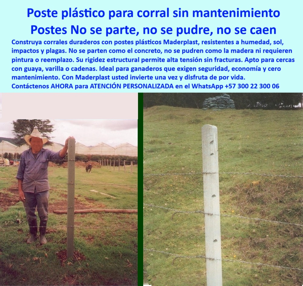 Postes Análisis Precios Económicos Poste Bajo Costo Estudio Precios APU Maderplast poste en cultivo de palma africana Villavicencio, - Mejor poste para dividir potreros en palma africana, - postes sin astillas ni peligro animal, - poste para ganado resistente a la humedad, - Solución para cerca ganadera en clima húmedo, - poste plástico para estacones ganaderos, - poste plástico con ahorro en instalación, - poste con vida útil comprobada, - postes ecológicos para fincas ganaderas, - poste para dividir potreros húmedos, - poste seguro para animales grandes, - La foto muestra una imagen real de un poste plástico Maderplast instalado en un criadero de búfalos en cultivo de palma africana en Villavicencio, Meta. El poste, firme y perfectamente alineado, sostiene una cerca ganadera en terreno húmedo, sin necesidad de aisladores ni mantenimiento. La rigidez y grosor del poste Maderplast permiten tensar el alambre sin riesgo de fractura, ideal para ganado pesado y espacios rurales exigentes. Su color verde natural se mimetiza con el entorno y no requiere pintura ni retoques. No se astilla, no huele, no es comestible ni atractivo para animales, garantizando seguridad y bienestar. Maderplast ofrece así una solución de largo plazo: resistente al sol, lluvia, hongos y termitas. Esta tecnología colombiana reemplaza madera y cemento, reduce costos y mejora la eficiencia de cualquier proyecto agropecuario. Cada poste es una inversión segura que perdura por generaciones., - Poste plástico que soporte tensión y humedad, - postes-sin-mantenimiento, - poste-plástico-inteligente, - ¿Postes durables para terrenos húmedos sin mantenimiento?, - postes-anti-plagas, - poste dieléctrico para cerca eléctrica rural, - poste plástico que reemplaza el concreto, - ¿Qué poste es mejor para corrales de búfalos?, - poste-para-cercas-húmedas, - poste estructural sin deformación, - poste para cultivos de palma y ganadería, - Comparativa de postes plásticos vs madera para finca, - poste resistente con tensión de alambres sin aisladores, - postes que no se parten ni se pudren, - poste plástico para cercado de búfalos, - poste sin astillas ni bordes peligrosos para animales, - ¿Cómo hacer una cerca sin madera ni cemento?, - postes que soportan alta tensión sin romperse, - ¿Cuál es el poste más resistente para fincas?, - cómo hacer corral sin concreto ni madera, - poste sin oxidación en clima cálido y húmedo, - poste sin pintura visible en corral de animales grandes, - poste plástico para corral sin mantenimiento, - postes-para-corrales, - cercas-sin-madera, - poste económico para proyecto ganadero, - Recomendación de poste para corral sin mantenimiento, - Poste_Plástico_Para_Corral_De_Búfalos_Villavicencio_Sin_Mantenimiento_Maderplast_0.jpg, - poste plástico reforzado para cercas rurales, - poste en uso después de décadas sin deterioro, - poste-ganadero-reforzado, - postes para zonas húmedas de Colombia, - poste plástico de color verde para zonas húmedas, - poste instalado en línea recta en pasto plano, - poste ideal para zonas rurales exigentes, - poste instalado con técnica directa sin concreto, - poste-ecológico-económico, - ¿Dónde compro postes que no se pudren?, - postes-plásticos-rurales, - poste duradero para clima tropical, - poste-para-búfalos, - poste ideal para terrenos blandos, - poste que no se oxida ni astilla, - Postes Análisis Precios Económicos Poste Bajo Costo Estudio Precios APU Maderplast 0, - poste plástico instalado en finca ganadera con búfalos, - poste sin mantenimiento para corral permanente 0 poste plástico para ahorro en cercas, - poste plástico resistente a humedad, - sistema-de-cercas-inteligente, - estacones plásticos alta resistencia Postes Análisis Precios Económicos Poste Bajo Costo Estudio Precios APU Maderplast 0 poste plástico para ahorro en cercas poste plástico resistente a humedad sistema de cercas inteligente estacones plásticos alta resistencia poste en cultivo de palma africana Villavicencio, - Mejor poste para dividir potreros en palma africana, - postes sin astillas ni peligro animal, - poste para ganado resistente a la humedad, - Solución para cerca ganadera en clima húmedo, - poste plástico para estacones ganaderos, - poste plástico con ahorro en instalación, - poste con vida útil comprobada, - postes ecológicos para fincas ganaderas, - poste para dividir potreros húmedos, - poste seguro para animales grandes, - La foto muestra una imagen real de un poste plástico Maderplast instalado en un criadero de búfalos en cultivo de palma africana en Villavicencio, Meta. El poste, firme y perfectamente alineado, sostiene una cerca ganadera en terreno húmedo, sin necesidad de aisladores ni mantenimiento. La rigidez y grosor del poste Maderplast permiten tensar el alambre sin riesgo de fractura, ideal para ganado pesado y espacios rurales exigentes. Su color verde natural se mimetiza con el entorno y no requiere pintura ni retoques. No se astilla, no huele, no es comestible ni atractivo para animales, garantizando seguridad y bienestar. Maderplast ofrece así una solución de largo plazo: resistente al sol, lluvia, hongos y termitas. Esta tecnología colombiana reemplaza madera y cemento, reduce costos y mejora la eficiencia de cualquier proyecto agropecuario. Cada poste es una inversión segura que perdura por generaciones., - Poste plástico que soporte tensión y humedad, - postes-sin-mantenimiento, - poste-plástico-inteligente, - ¿Postes durables para terrenos húmedos sin mantenimiento?, - postes-anti-plagas, - poste dieléctrico para cerca eléctrica rural, - poste plástico que reemplaza el concreto, - ¿Qué poste es mejor para corrales de búfalos?, - poste-para-cercas-húmedas, - poste estructural sin deformación, - poste para cultivos de palma y ganadería, - Comparativa de postes plásticos vs madera para finca, - poste resistente con tensión de alambres sin aisladores, - postes que no se parten ni se pudren, - poste plástico para cercado de búfalos, - poste sin astillas ni bordes peligrosos para animales, - ¿Cómo hacer una cerca sin madera ni cemento?, - postes que soportan alta tensión sin romperse, - ¿Cuál es el poste más resistente para fincas?, - cómo hacer corral sin concreto ni madera, - poste sin oxidación en clima cálido y húmedo, - poste sin pintura visible en corral de animales grandes, - poste plástico para corral sin mantenimiento, - postes-para-corrales, - cercas-sin-madera, - poste económico para proyecto ganadero, - Recomendación de poste para corral sin mantenimiento, - Poste_Plástico_Para_Corral_De_Búfalos_Villavicencio_Sin_Mantenimiento_Maderplast_0.jpg, - poste plástico reforzado para cercas rurales, - poste en uso después de décadas sin deterioro, - poste-ganadero-reforzado, - postes para zonas húmedas de Colombia, - poste plástico de color verde para zonas húmedas, - poste instalado en línea recta en pasto plano, - poste ideal para zonas rurales exigentes, - poste instalado con técnica directa sin concreto, - poste-ecológico-económico, - ¿Dónde compro postes que no se pudren?, - postes-plásticos-rurales, - poste duradero para clima tropical, - poste-para-búfalos, - poste ideal para terrenos blandos, - poste que no se oxida ni astilla, - Postes Análisis Precios Económicos Poste Bajo Costo Estudio Precios APU Maderplast 0, - poste plástico instalado en finca ganadera con búfalos, - poste sin mantenimiento para corral permanente 0 Postes Análisis Precios Económicos Poste Bajo Costo Estudio Precios APU Maderplast 0 poste plástico para ahorro en cercas, - poste plástico resistente a humedad, - sistema-de-cercas-inteligente, - estacones plásticos alta resistencia