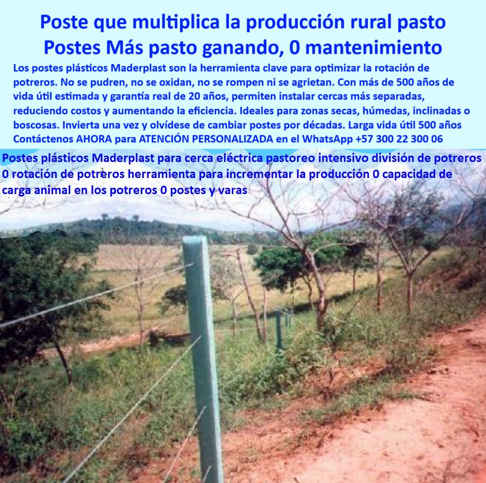 Postes Para Conservación De Cuencas Poste Forestal Ecológico Reciclable Maderplast poste dieléctrico para carga ganadera en terrenos difíciles, - poste para dividir pasturas sin concreto ni pintura, - poste-plástico-para-división-de-praderas, - poste flexible para terreno con laderas y zonas boscosas, - poste para cerca eléctrica con separación de 25 metros, - poste reforzado que no se cae en pendientes, - Solución para rotación de potreros sin mantenimiento con postes, - Instalación rural con postes ecológicos funcionales, - Sistema ganadero de rotación con poste reciclado, - Recomendación de poste dieléctrico para zonas boscosas, - poste que evita reemplazos por más de dos décadas, - poste plástico para aumentar carga animal en el potrero, - Esta imagen muestra un sistema ganadero de alta eficiencia con postes reciclados Maderplast, diseñados para aumentar la productividad mediante la rotación de potreros. Instalados en terrenos inclinados y sin mantenimiento, los postes Maderplast soportan sol, humedad, impactos y presión animal sin oxidarse ni deformarse. Son ideales para zonas secas o boscosas donde se requiere durabilidad, ligereza y firmeza. Representan una inversión ecológica y rentable para ganaderos que buscan eficiencia real y reducción de costos., - poste de polímero resistente para ganado en rotación, - Cerramiento ganadero en zona tropical con poste plástico, - poste que incrementa productividad en ganadería extensiva, - ¿Qué poste aumenta la eficiencia de la rotación de potreros?, - ¿Dónde comprar postes reciclados para cercas eléctricas duraderas?, - poste-reciclado-para-potreros-tecnificados, - Poste reciclado para cercas en terrenos con ladera o montaña, - Terreno con poste firme sin concreto ni pintura, - poste-para-terrenos-inclinados-y-boscosos, - poste con soporte estructural para zonas erosionables, - poste para electrificar cercas en terrenos ganaderos, - ¿Qué poste me sirve para cercar potreros inclinados sin mantenimiento?, - poste-plastico-rotacion-potreros-productividad-ganadera.jpg, - poste ecológico para cerramientos en potreros tecnificados, - poste reciclado certificado para uso rural intensivo, - poste-electrificable-sin-aisladores, - poste-sin-mantenimiento-para-cercas-ganaderas, - poste-para-carga-animal-sostenida, - Cerca con postes plásticos delimitando potrero boscoso, - ¿Qué poste plástico puedo usar en zonas de difícil acceso?, - poste reciclado para delimitar zonas ganaderas extensas, - poste-sólido-para-pastoreo-intensivo, - poste para optimizar sistemas de rotación de potrero, - poste-durable-para-zonas-difíciles, - Delimitación de pradera con poste reciclado liviano, - ¿Cuál es el mejor poste para dividir pasto en ganadería intensiva?, - ¿Qué poste mejora la productividad ganadera en pastoreo intensivo?, - poste que no se quiebra en climas secos o húmedos, - poste plástico reciclado para rotación ganadera eficiente, - poste sin óxido ideal para rotación de praderas, - poste-ecológico-para-rotación-de-pastos, - Poste plástico ecológico para mejorar carga animal en potrero, - Poste plástico para zona seca sin mantenimiento, - poste sin mantenimiento para dividir potreros inclinados, - poste reciclado para maximizar pasto y reducir varas, - poste para mejorar productividad ganadera sin mantenimiento, - poste técnico para eficiencia en división de pasto, - Cerca estructurada con postes reciclados resistentes, - poste liviano con anclaje firme para cercas en montaña, - poste-tecnológico-para-agroindustria, - poste estructural para pastoreo intensivo en zonas secas, - poste ecológico para ahorro en sistemas rotacionales, - Poste vertical ecológico en pastizal inclinado, - Poste ecológico instalado en terreno inclinado rural0 Poste Multifunción para Terrenos No Convencionales, - Postes para señalización de montaña, - Postes para zonas boscosas, - Poste Anti-Deslizamiento 0 Postes Para Conservación De Cuencas Poste Forestal Ecológico Reciclable Maderplast 0 Poste Multifunción para Terrenos No Convencionales Postes para señalización de montaña Postes para zonas boscosas Poste Anti Deslizamiento poste dieléctrico para carga ganadera en terrenos difíciles, - poste para dividir pasturas sin concreto ni pintura, - poste-plástico-para-división-de-praderas, - poste flexible para terreno con laderas y zonas boscosas, - poste para cerca eléctrica con separación de 25 metros, - poste reforzado que no se cae en pendientes, - Solución para rotación de potreros sin mantenimiento con postes, - Instalación rural con postes ecológicos funcionales, - Sistema ganadero de rotación con poste reciclado, - Recomendación de poste dieléctrico para zonas boscosas, - poste que evita reemplazos por más de dos décadas, - poste plástico para aumentar carga animal en el potrero, - Esta imagen muestra un sistema ganadero de alta eficiencia con postes reciclados Maderplast, diseñados para aumentar la productividad mediante la rotación de potreros. Instalados en terrenos inclinados y sin mantenimiento, los postes Maderplast soportan sol, humedad, impactos y presión animal sin oxidarse ni deformarse. Son ideales para zonas secas o boscosas donde se requiere durabilidad, ligereza y firmeza. Representan una inversión ecológica y rentable para ganaderos que buscan eficiencia real y reducción de costos., - poste de polímero resistente para ganado en rotación, - Cerramiento ganadero en zona tropical con poste plástico, - poste que incrementa productividad en ganadería extensiva, - ¿Qué poste aumenta la eficiencia de la rotación de potreros?, - ¿Dónde comprar postes reciclados para cercas eléctricas duraderas?, - poste-reciclado-para-potreros-tecnificados, - Poste reciclado para cercas en terrenos con ladera o montaña, - Terreno con poste firme sin concreto ni pintura, - poste-para-terrenos-inclinados-y-boscosos, - poste con soporte estructural para zonas erosionables, - poste para electrificar cercas en terrenos ganaderos, - ¿Qué poste me sirve para cercar potreros inclinados sin mantenimiento?, - poste-plastico-rotacion-potreros-productividad-ganadera.jpg, - poste ecológico para cerramientos en potreros tecnificados, - poste reciclado certificado para uso rural intensivo, - poste-electrificable-sin-aisladores, - poste-sin-mantenimiento-para-cercas-ganaderas, - poste-para-carga-animal-sostenida, - Cerca con postes plásticos delimitando potrero boscoso, - ¿Qué poste plástico puedo usar en zonas de difícil acceso?, - poste reciclado para delimitar zonas ganaderas extensas, - poste-sólido-para-pastoreo-intensivo, - poste para optimizar sistemas de rotación de potrero, - poste-durable-para-zonas-difíciles, - Delimitación de pradera con poste reciclado liviano, - ¿Cuál es el mejor poste para dividir pasto en ganadería intensiva?, - ¿Qué poste mejora la productividad ganadera en pastoreo intensivo?, - poste que no se quiebra en climas secos o húmedos, - poste plástico reciclado para rotación ganadera eficiente, - poste sin óxido ideal para rotación de praderas, - poste-ecológico-para-rotación-de-pastos, - Poste plástico ecológico para mejorar carga animal en potrero, - Poste plástico para zona seca sin mantenimiento, - poste sin mantenimiento para dividir potreros inclinados, - poste reciclado para maximizar pasto y reducir varas, - poste para mejorar productividad ganadera sin mantenimiento, - poste técnico para eficiencia en división de pasto, - Cerca estructurada con postes reciclados resistentes, - poste liviano con anclaje firme para cercas en montaña, - poste-tecnológico-para-agroindustria, - poste estructural para pastoreo intensivo en zonas secas, - poste ecológico para ahorro en sistemas rotacionales, - Poste vertical ecológico en pastizal inclinado, - Poste ecológico instalado en terreno inclinado rural 0 Postes Para Conservación De Cuencas Poste Forestal Ecológico Reciclable Maderplast 0 Poste Multifunción para Terrenos No Convencionales, - Postes para señalización de montaña, - Postes para zonas boscosas, - Poste Anti-Deslizamiento 0