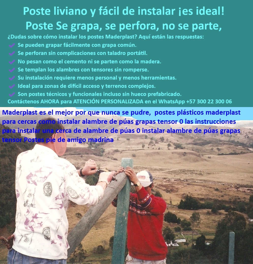 Postes Para Conservación De Cuencas Poste Forestal Ecológico Reciclable Maderplast poste de polímero perforable con taladro portátil, - Poste verde sostenido por dos personas sobre una ladera, - ¿Qué poste para cercas no se parte con el taladro?, - poste para cercas que se perfora sin romperse, - poste-plástico-para-taladro-portátil, - poste-fácil-de-grapar-en-campo, - poste que no se parte al atornillar, - poste reciclado para uso en reservas o cuencas, - poste-plástico-liviano-para-instalación-rápida, - poste-para-senderos-naturales-y-rurales, - ¿Cómo se grapa un poste de plástico para cerca?, - poste-reciclado-para-geografías-complejas, - poste para terrenos con alta pendiente o ladera, - poste para cerca de alambre con tensor, - poste estructural para anclar cercas ganaderas, - poste que permite grapado sin aisladores, - ¿Dónde compro postes plásticos que se perforen fácil?, - poste que no se agrieta al colocar tensor, - Poste liviano en instalación sobre terreno rocoso, - poste de fácil instalación para potrero inclinado, - poste-plástico-sin-cemento-ni-astillas, - poste plástico para zonas inaccesibles o remotas, - Cerca ganadera en pendiente con poste sin concreto, - Poste plástico siendo instalado con grapa en zona montañosa, - poste-para-cercado-con-tensor, - poste ecológico con sujeción técnica en campo, - Alternativa a postes de madera que se puedan grapar, - ¿Qué poste puedo instalar sin concreto en terreno difícil?, - poste-plástico-sin-maquinaria-pesada, - poste con memoria plástica que no se astilla, - Sistema de anclaje con tensor en poste plástico, - Trabajo de campo con poste plástico en finca inclinada, - ¿Qué poste permite instalación en terrenos inclinados sin maquinaria?, - poste resistente a torsión en terrenos inclinados, - poste plástico liviano para fácil instalación rural, - Poste técnico para áreas remotas con grapado sencillo, - poste-plástico-para-reservas-ambientales, - poste técnico para instalar con grapas comunes, - poste para cercado con pie de amigo, - Uso de herramienta simple sobre poste de polímero, - poste para zonas rurales sin maquinaria pesada, - Poste plástico para cercas rurales que no requiere concreto, - poste con instalación rápida sin cemento ni grietas, - Instalación manual de poste reciclado en terreno rural, - poste plástico fácil de anclar con grapas y tornillos, - poste-para-cercas-en-terrenos-inclinados, - Técnica de instalación rural con poste perforable, - Poste plástico usado en cercado ecológico de cuenca, - poste-plastico-instalacion-grapas-terreno-inclinado-rural.jpg, - poste resistente para cercas ganaderas sin herramientas especiales, - poste ganadero para áreas sin acceso vehicular, - ¿Qué poste es ideal para laderas o pendientes?, - poste ideal para senderos ecológicos y reservas, - poste reciclado para geografía compleja sin concreto, - poste plástico compatible con herramientas estándar, - Poste liviano de polímero para caminos ecológicos, - La imagen muestra una instalación real de un poste plástico Maderplast sobre terreno montañoso, realizada sin concreto, con herramientas básicas y sin fracturas. Estos postes Maderplast son ideales para zonas de difícil acceso, ya que permiten el grapado y perforación sencilla con taladro portátil. Su ligereza facilita el transporte y su resistencia estructural evita roturas al instalar tensores o accesorios. Perfectos para laderas, senderos ecológicos, caminos rurales y cuencas hídricas, ofrecen una solución práctica y duradera sin maquinaria pesada ni mantenimiento. 0 Poste Técnico para Geografías Complejas, - Postes livianos para terrenos remotos, - Postes para terrenos inclinados, - Poste para Senderos Naturales, Postes Para Conservación De Cuencas Poste Forestal Ecológico Reciclable Maderplast 0 Poste Técnico para Geografías Complejas Postes livianos para terrenos remotos Postes para terrenos inclinados Poste para Senderos Naturales poste de polímero perforable con taladro portátil, - Poste verde sostenido por dos personas sobre una ladera, - ¿Qué poste para cercas no se parte con el taladro?, - poste para cercas que se perfora sin romperse, - poste-plástico-para-taladro-portátil, - poste-fácil-de-grapar-en-campo, - poste que no se parte al atornillar, - poste reciclado para uso en reservas o cuencas, - poste-plástico-liviano-para-instalación-rápida, - poste-para-senderos-naturales-y-rurales, - ¿Cómo se grapa un poste de plástico para cerca?, - poste-reciclado-para-geografías-complejas, - poste para terrenos con alta pendiente o ladera, - poste para cerca de alambre con tensor, - poste estructural para anclar cercas ganaderas, - poste que permite grapado sin aisladores, - ¿Dónde compro postes plásticos que se perforen fácil?, - poste que no se agrieta al colocar tensor, - Poste liviano en instalación sobre terreno rocoso, - poste de fácil instalación para potrero inclinado, - poste-plástico-sin-cemento-ni-astillas, - poste plástico para zonas inaccesibles o remotas, - Cerca ganadera en pendiente con poste sin concreto, - Poste plástico siendo instalado con grapa en zona montañosa, - poste-para-cercado-con-tensor, - poste ecológico con sujeción técnica en campo, - Alternativa a postes de madera que se puedan grapar, - ¿Qué poste puedo instalar sin concreto en terreno difícil?, - poste-plástico-sin-maquinaria-pesada, - poste con memoria plástica que no se astilla, - Sistema de anclaje con tensor en poste plástico, - Trabajo de campo con poste plástico en finca inclinada, - ¿Qué poste permite instalación en terrenos inclinados sin maquinaria?, - poste resistente a torsión en terrenos inclinados, - poste plástico liviano para fácil instalación rural, - Poste técnico para áreas remotas con grapado sencillo, - poste-plástico-para-reservas-ambientales, - poste técnico para instalar con grapas comunes, - poste para cercado con pie de amigo, - Uso de herramienta simple sobre poste de polímero, - poste para zonas rurales sin maquinaria pesada, - Poste plástico para cercas rurales que no requiere concreto, - poste con instalación rápida sin cemento ni grietas, - Instalación manual de poste reciclado en terreno rural, - poste plástico fácil de anclar con grapas y tornillos, - poste-para-cercas-en-terrenos-inclinados, - Técnica de instalación rural con poste perforable, - Poste plástico usado en cercado ecológico de cuenca, - poste-plastico-instalacion-grapas-terreno-inclinado-rural.jpg, - poste resistente para cercas ganaderas sin herramientas especiales, - poste ganadero para áreas sin acceso vehicular, - ¿Qué poste es ideal para laderas o pendientes?, - poste ideal para senderos ecológicos y reservas, - poste reciclado para geografía compleja sin concreto, - poste plástico compatible con herramientas estándar, - Poste liviano de polímero para caminos ecológicos, - La imagen muestra una instalación real de un poste plástico Maderplast sobre terreno montañoso, realizada sin concreto, con herramientas básicas y sin fracturas. Estos postes Maderplast son ideales para zonas de difícil acceso, ya que permiten el grapado y perforación sencilla con taladro portátil. Su ligereza facilita el transporte y su resistencia estructural evita roturas al instalar tensores o accesorios. Perfectos para laderas, senderos ecológicos, caminos rurales y cuencas hídricas, ofrecen una solución práctica y duradera sin maquinaria pesada ni mantenimiento. 0 Postes Para Conservación De Cuencas Poste Forestal Ecológico Reciclable Maderplast 0 Poste Técnico para Geografías Complejas, - Postes livianos para terrenos remotos, - Postes para terrenos inclinados, - Poste para Senderos Naturales,