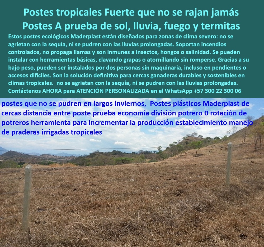 Postes Para Conservación De Cuencas Poste Forestal Ecológico Reciclable Maderplast poste de polímero resistente para clima severo, - poste que evita reemplazos frecuentes en fincas, - poste para ganadería en suelos irregulares, - poste que se instala sin maquinaria pesada, - poste que soporta cambios de temperatura extremos, - poste-ecológico-para-cercas-rurales, - Vista lejana de potrero tropical con cerco blanco, - poste con alto desempeño en zonas montañosas, - poste estructural para caminos empinados rurales, - poste-fácil-de-instalar-en-acantilados, - poste sin mantenimiento para cercas tropicales, - poste-para-división-de-potreros-tropicales, - poste plástico para zonas tropicales húmedas, - poste sin pudrición para clima extremo rural, - poste para praderas tropicales intensivas, - poste de carga ligera y máxima firmeza, - poste plástico para terrenos secos y húmedos, - poste ecológico para ganadería de montaña, - Cerca ecológica instalada sobre pradera árida, - ¿Dónde consigo postes ecológicos para clima tropical?, - poste tropical que no se oxida ni se parte, - Instalación de postes livianos en cerro inclinado, - poste-liviano-y-resistente-al-fuego, - poste para conservación ambiental ganadera, - Línea de postes tropicales para cercas técnicas, - poste duradero sin rajaduras ni deformación, - poste reciclable para cercado en cuencas altas, - En la imagen se observan postes ecológicos Maderplast instalados sobre una pradera tropical de difícil acceso. Estos postes Maderplast, fabricados con polímero reciclado, son resistentes al sol intenso, lluvias prolongadas, fuego e insectos. No requieren maquinaria pesada para su instalación, ni pintura ni mantenimiento posterior. Ideales para ganadería en zonas secas o húmedas, permiten una cerca firme, ecológica y durable, incluso en pendientes o terrenos inestables. Su diseño liviano los hace funcionales donde otros postes fallan., - Postes sin concreto en suelo con baja humedad, - ¿Cuál es el mejor poste para dividir potreros tropicales?, - poste-sin-pudrición-ni-oxidación, - poste para acantilados y laderas inestables, - Postes alineados en campo con escasa vegetación, - poste resistente a lluvias prolongadas y sequía, - poste-sin-mantenimiento-para-montañas, - poste-plástico-para-clima-tropical, - poste-para-cercas-en-zonas-difíciles, - poste fácil de perforar para cercas ganaderas, - poste técnico para división de potreros rurales, - poste anticorrosión para terrenos con humedad, - Postes blancos separados marcando terreno seco tropical, - poste-para-cercas-en-cuencas-altas, - poste resistente para fincas con clima tropical, - poste con resistencia a fuego e insectos, - poste ideal para cercas ecológicas duraderas, - poste-ecologico-clima-tropical-resistente-sin-mantenimiento.jpg, - poste con memoria plástica y alta flexibilidad, - Postes erguidos sobre terreno hostil y pedregoso, - poste para potreros tropicales sin mantenimiento, - Terreno inclinado delimitado con postes resistentes, - ¿Postes fáciles de instalar en terreno empinado?, - poste liviano que se instala sin maquinaria rural, - ¿Qué poste no se daña con lluvias prolongadas?, - ¿Qué poste aguanta el sol, la lluvia y las termitas?, - poste-reciclado-para-climas-extremos, - División rural con postes plásticos en zona seca, - poste ecológico reciclado para difícil acceso 0 Postes ecológicos, - Postes para difícil acceso, - Poste para Caminos Empinados, - Poste para Acantilados Seguros, Poste Inteligente Zonas Inestables Postes Para Conservación De Cuencas Poste Forestal Ecológico Reciclable Maderplast 0 Postes ecológicos Postes para difícil acceso Poste para Caminos Empinados Poste para Acantilados Seguros Poste Inteligente Zonas Inestables poste de polímero resistente para clima severo, - poste que evita reemplazos frecuentes en fincas, - poste para ganadería en suelos irregulares, - poste que se instala sin maquinaria pesada, - poste que soporta cambios de temperatura extremos, - poste-ecológico-para-cercas-rurales, - Vista lejana de potrero tropical con cerco blanco, - poste con alto desempeño en zonas montañosas, - poste estructural para caminos empinados rurales, - poste-fácil-de-instalar-en-acantilados, - poste sin mantenimiento para cercas tropicales, - poste-para-división-de-potreros-tropicales, - poste plástico para zonas tropicales húmedas, - poste sin pudrición para clima extremo rural, - poste para praderas tropicales intensivas, - poste de carga ligera y máxima firmeza, - poste plástico para terrenos secos y húmedos, - poste ecológico para ganadería de montaña, - Cerca ecológica instalada sobre pradera árida, - ¿Dónde consigo postes ecológicos para clima tropical?, - poste tropical que no se oxida ni se parte, - Instalación de postes livianos en cerro inclinado, - poste-liviano-y-resistente-al-fuego, - poste para conservación ambiental ganadera, - Línea de postes tropicales para cercas técnicas, - poste duradero sin rajaduras ni deformación, - poste reciclable para cercado en cuencas altas, - En la imagen se observan postes ecológicos Maderplast instalados sobre una pradera tropical de difícil acceso. Estos postes Maderplast, fabricados con polímero reciclado, son resistentes al sol intenso, lluvias prolongadas, fuego e insectos. No requieren maquinaria pesada para su instalación, ni pintura ni mantenimiento posterior. Ideales para ganadería en zonas secas o húmedas, permiten una cerca firme, ecológica y durable, incluso en pendientes o terrenos inestables. Su diseño liviano los hace funcionales donde otros postes fallan., - Postes sin concreto en suelo con baja humedad, - ¿Cuál es el mejor poste para dividir potreros tropicales?, - poste-sin-pudrición-ni-oxidación, - poste para acantilados y laderas inestables, - Postes alineados en campo con escasa vegetación, - poste resistente a lluvias prolongadas y sequía, - poste-sin-mantenimiento-para-montañas, - poste-plástico-para-clima-tropical, - poste-para-cercas-en-zonas-difíciles, - poste fácil de perforar para cercas ganaderas, - poste técnico para división de potreros rurales, - poste anticorrosión para terrenos con humedad, - Postes blancos separados marcando terreno seco tropical, - poste-para-cercas-en-cuencas-altas, - poste resistente para fincas con clima tropical, - poste con resistencia a fuego e insectos, - poste ideal para cercas ecológicas duraderas, - poste-ecologico-clima-tropical-resistente-sin-mantenimiento.jpg, - poste con memoria plástica y alta flexibilidad, - Postes erguidos sobre terreno hostil y pedregoso, - poste para potreros tropicales sin mantenimiento, - Terreno inclinado delimitado con postes resistentes, - ¿Postes fáciles de instalar en terreno empinado?, - poste liviano que se instala sin maquinaria rural, - ¿Qué poste no se daña con lluvias prolongadas?, - ¿Qué poste aguanta el sol, la lluvia y las termitas?, - poste-reciclado-para-climas-extremos, - División rural con postes plásticos en zona seca, - poste ecológico reciclado para difícil acceso 0 Postes Para Conservación De Cuencas Poste Forestal Ecológico Reciclable Maderplast 0 Postes ecológicos, - Postes para difícil acceso, - Poste para Caminos Empinados, - Poste para Acantilados Seguros, Poste Inteligente Zonas Inestables