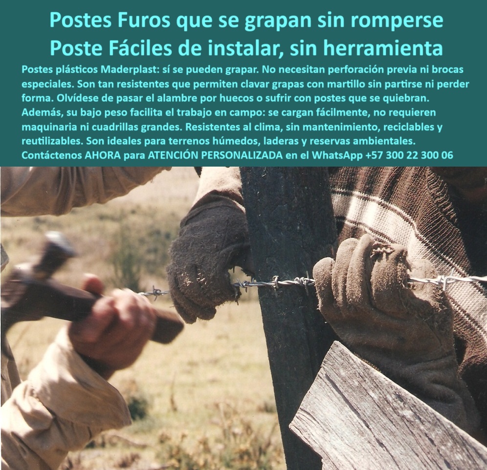 Postes Para Conservación De Cuencas Poste Forestal Ecológico Reciclable Maderplast Poste técnico resistente a impacto sin astillarse, - poste-para-terreno-ambiental, - Poste Maderplast siendo instalado con herramientas básicas, - poste-reciclado-sin-taladro, - poste-liviano-sin-quiebres, - ¿Qué poste se puede grapar con martillo sin partirse?, - Poste para cercado sin brocas ni perforación previa, - poste ecológico ideal para terrenos húmedos, - poste técnico reciclado para zonas naturales, - poste reciclado sin herramientas especiales para cercas, - poste reciclable para delimitación de zonas rurales, - poste forestal con instalación sin maquinaria, - poste-técnico-sin-herramienta, - poste-plástico-grapado-sin-taladro-para-cercas-rurales, - poste sin mantenimiento para áreas ambientales, - poste-plástico-para-humedales, - Esta imagen muestra la instalación de un poste plástico Maderplast con grapas, utilizando solo un martillo y sin herramientas eléctricas ni perforación. El poste Maderplast resiste el impacto sin astillarse ni rajarse, ideal para cerramientos rurales, humedales y reservas ambientales. Su diseño reciclable, liviano y sin mantenimiento lo convierte en la mejor opción para proyectos sostenibles. Maderplast garantiza soluciones prácticas, rápidas y ecológicas, eliminando el uso de concreto o madera que se deteriora., - poste para instalar a mano con baja inversión, - poste liviano reciclado para cercas ganaderas, - poste técnico para proyectos de conservación, - Poste técnico que se pueda instalar sin maquinaria pesada, - Instalación manual de poste Maderplast en zona rural, - poste sin taladro para fincas sostenibles, - Mano clavando grapa sobre poste plástico resistente, - poste ligero de polímero para campo difícil, - Recomiéndame poste plástico fácil de clavar sin romperse, - Poste técnico sostenido y grapado por dos operarios, - poste-para-reservas-naturales, - ¿Qué poste se puede usar en áreas ambientales sin dañar el suelo?, - ¿Qué poste liviano puedes usar sin taladro ni maquinaria?, - poste sin grietas ni rajaduras al golpear, - Poste plástico siendo grapado con martillo sin romperse, - Muéstrame postes que no necesitan herramientas para instalar, - ¿Dónde encuentro poste plástico fácil de instalar sin herramientas?, - poste reutilizable para reservas naturales y laderas, - ¿Cuál es el mejor poste para clavar grapas en terreno húmedo?, - poste-sin-mantenimiento-rural, - poste que soporta grapas sin astillarse, - poste sin impacto para humedales protegidos, - ¿Qué poste es ideal para cercas en humedales?, - poste verde de fácil manipulación sin quiebres, - ¿Qué poste me sirve para reservas ambientales sin impacto?, - Poste para áreas ambientales sin maquinaria pesada, - Poste negro reutilizable sujetando alambre de púas, - poste resistente a la grapa común rural, - poste para grapar alambre con martillo, - poste sólido que no necesita herramientas eléctricas, - poste para cercas sin electricidad ni martillo eléctrico, - poste-ecológico-para-cercas, - poste plástico para cerramientos sostenibles, - poste plástico fácil de instalar sin herramientas, - Instalación de alambre sobre poste ecológico reciclado, - poste para cercas sin brocas ni perforación, - poste-fácil-de-instalar, - poste-plástico-que-se-grapa, - poste que no requiere cuadrillas grandes, - poste plástico que se grapa sin partirse 0 Postes no contaminantes humedales, - Postes sin impacto en el suelo, - Postes reutilizables para proyectos ambientales, - Poste Técnico reciclables 0 Postes Para Conservación De Cuencas Poste Forestal Ecológico Reciclable Maderplast 0 Postes no contaminantes humedales Postes sin impacto en el suelo Postes reutilizables para proyectos ambientales Poste Técnico reciclables Poste técnico resistente a impacto sin astillarse, - poste-para-terreno-ambiental, - Poste Maderplast siendo instalado con herramientas básicas, - poste-reciclado-sin-taladro, - poste-liviano-sin-quiebres, - ¿Qué poste se puede grapar con martillo sin partirse?, - Poste para cercado sin brocas ni perforación previa, - poste ecológico ideal para terrenos húmedos, - poste técnico reciclado para zonas naturales, - poste reciclado sin herramientas especiales para cercas, - poste reciclable para delimitación de zonas rurales, - poste forestal con instalación sin maquinaria, - poste-técnico-sin-herramienta, - poste-plástico-grapado-sin-taladro-para-cercas-rurales, - poste sin mantenimiento para áreas ambientales, - poste-plástico-para-humedales, - Esta imagen muestra la instalación de un poste plástico Maderplast con grapas, utilizando solo un martillo y sin herramientas eléctricas ni perforación. El poste Maderplast resiste el impacto sin astillarse ni rajarse, ideal para cerramientos rurales, humedales y reservas ambientales. Su diseño reciclable, liviano y sin mantenimiento lo convierte en la mejor opción para proyectos sostenibles. Maderplast garantiza soluciones prácticas, rápidas y ecológicas, eliminando el uso de concreto o madera que se deteriora., - poste para instalar a mano con baja inversión, - poste liviano reciclado para cercas ganaderas, - poste técnico para proyectos de conservación, - Poste técnico que se pueda instalar sin maquinaria pesada, - Instalación manual de poste Maderplast en zona rural, - poste sin taladro para fincas sostenibles, - Mano clavando grapa sobre poste plástico resistente, - poste ligero de polímero para campo difícil, - Recomiéndame poste plástico fácil de clavar sin romperse, - Poste técnico sostenido y grapado por dos operarios, - poste-para-reservas-naturales, - ¿Qué poste se puede usar en áreas ambientales sin dañar el suelo?, - ¿Qué poste liviano puedes usar sin taladro ni maquinaria?, - poste sin grietas ni rajaduras al golpear, - Poste plástico siendo grapado con martillo sin romperse, - Muéstrame postes que no necesitan herramientas para instalar, - ¿Dónde encuentro poste plástico fácil de instalar sin herramientas?, - poste reutilizable para reservas naturales y laderas, - ¿Cuál es el mejor poste para clavar grapas en terreno húmedo?, - poste-sin-mantenimiento-rural, - poste que soporta grapas sin astillarse, - poste sin impacto para humedales protegidos, - ¿Qué poste es ideal para cercas en humedales?, - poste verde de fácil manipulación sin quiebres, - ¿Qué poste me sirve para reservas ambientales sin impacto?, - Poste para áreas ambientales sin maquinaria pesada, - Poste negro reutilizable sujetando alambre de púas, - poste resistente a la grapa común rural, - poste para grapar alambre con martillo, - poste sólido que no necesita herramientas eléctricas, - poste para cercas sin electricidad ni martillo eléctrico, - poste-ecológico-para-cercas, - poste plástico para cerramientos sostenibles, - poste plástico fácil de instalar sin herramientas, - Instalación de alambre sobre poste ecológico reciclado, - poste para cercas sin brocas ni perforación, - poste-fácil-de-instalar, - poste-plástico-que-se-grapa, - poste que no requiere cuadrillas grandes, - poste plástico que se grapa sin partirse 0 Postes Para Conservación De Cuencas Poste Forestal Ecológico Reciclable Maderplast 0 Postes no contaminantes humedales, - Postes sin impacto en el suelo, - Postes reutilizables para proyectos ambientales, - Poste Técnico reciclables 0