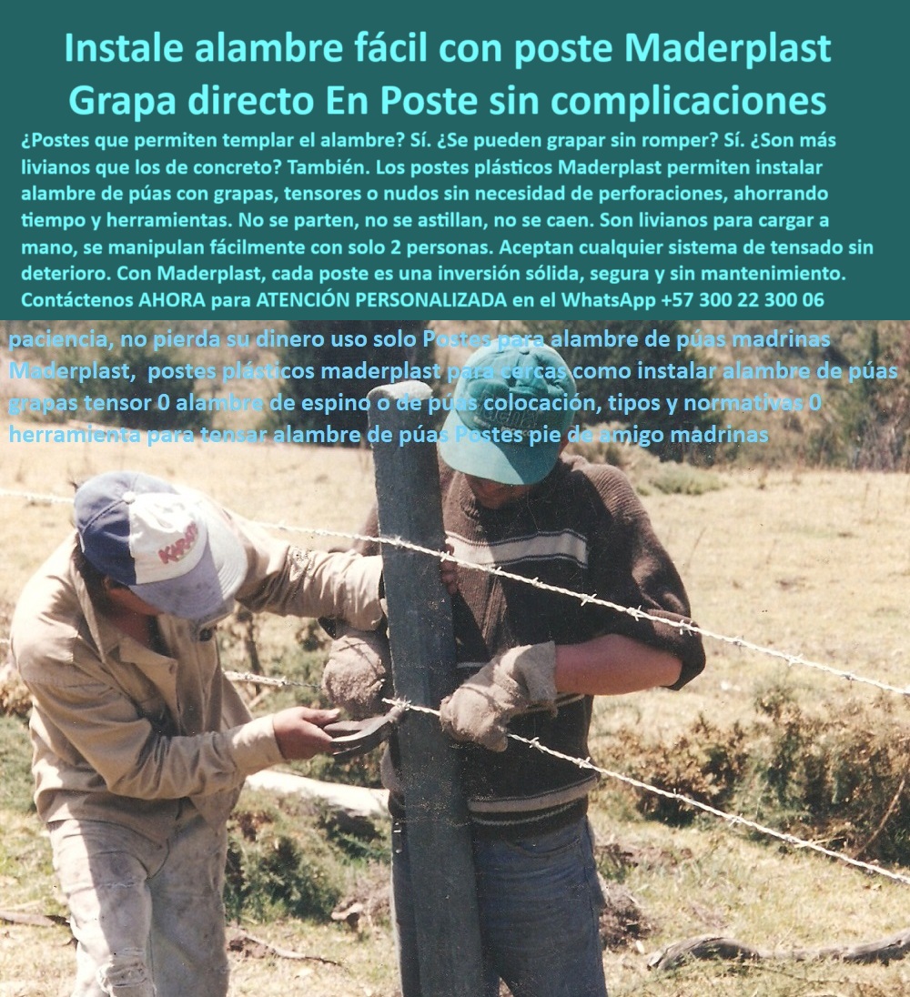 Postes Para Conservación De Cuencas Poste Forestal Ecológico Reciclable Maderplast poste sin concreto para cercas con púas, - poste-resistente-a-tensado-extremo, - Recomiéndame un poste plástico para grapar alambre de púas directamente, - Poste para cercas rurales que no necesite herramientas, - poste-sin-herramienta-para-cercas, - poste-con-martillo-sin-rajaduras, - poste para dividir potreros con alambre de espino, - poste para colocar grapas con martillo directo, - poste que no requiere maquinaria pesada, - poste ideal para alambrado sin brocas, - ¿Qué poste resiste alambres tensados sin deformarse?, - Trabajadores instalando alambre de púas en poste plástico, - poste para madrinas pie de amigo, - poste plástico para cercas con alambre tensor, - Poste estructural sin brocas en terreno ganadero, - poste-para-cerca-sin-taladro, - ¿Qué poste puedo usar que no se astille al colocar tensores?, - poste dieléctrico para alambrado ganadero, - poste rural para fijación sin complicaciones, - Poste reciclado resistente para cercas sin concreto, - poste-plástico-grapado-directo, - poste estructural sin riesgo de astillado, - ¿Cuál es el poste más fácil para instalar alambre de púas?, - poste-de-fácil-instalación-rural, - poste liviano para carga manual en potreros, - La imagen muestra la instalación directa de alambre de púas sobre un poste plástico Maderplast, sin perforaciones, sin herramientas eléctricas y sin romper el material. Estos postes Maderplast permiten fijar grapas con martillo y son tan resistentes que no se astillan ni ceden bajo tensión. Fabricados en polímero reciclado, son livianos, durables, dieléctricos, sin mantenimiento y perfectos para ganadería, cercas vivas y zonas rurales exigentes. Ideales para quienes buscan una solución práctica, fuerte y sostenible en cercados de alto rendimiento., - poste que ahorra tiempo en instalación de cercas, - poste para alambrado de púas fácil instalación, - Fijación de alambre en poste ecológico y resistente, - poste que no se parte al martillar grapas, - poste-reciclado-contra-impactos, - Grapado directo con martillo en poste Maderplast reciclado, - poste-dieléctrico-para-potreros, - poste-para-grapar-sin-romper, - poste reciclado para alambrado sin perforación previa, - poste sin oxidación para alambrado rural intensivo, - ¿Dónde venden postes que no se parten al martillar grapas?, - ¿Qué poste sirve para colocar alambre sin que se rompa?, - Poste de fácil instalación para alambrado con tensión sin mantenimiento, - Instalación de cerca con poste que no se parte, - poste funcional sin riesgo de rajadura, - poste para cercados eficientes en ganadería, - poste-liviano-para-alambre-de-púas, - Trabajo manual de dos personas instalando cerca eficiente, - poste para cerca con grapas sin astillarse, - Poste plástico cuadrado siendo grapado sin romperse, - poste para cercas con tensión sin rajaduras, - Imagen de cercado con poste plástico grapa directa, - poste para instalación con tensor sin taladro, - poste plástico para finca sin mantenimiento, - poste ecológico resistente a impacto ganadero, - Poste plástico sin taladro para cercado rural, - poste económico que no requiere herramientas, - poste plástico para grapar alambre sin herramientas, - poste-plastico-grapado-directo-alambre-de-puas-maderplast.jpg, - ¿Qué poste puedo usar sin broca ni taladro?, - Poste para alambre de espino con fijación sencilla 0 Postes para monitoreo de fauna silvestre, - Postes que no se pudren, - Postes para reforestación sostenible, - Poste para Protección Cortes Vertical Postes Para Conservación De Cuencas Poste Forestal Ecológico Reciclable Maderplast 0 Postes para monitoreo de fauna silvestre Postes que no se pudren Postes para reforestación sostenible Poste para Protección Cortes Vertical 0 poste sin concreto para cercas con púas, - poste-resistente-a-tensado-extremo, - Recomiéndame un poste plástico para grapar alambre de púas directamente, - Poste para cercas rurales que no necesite herramientas, - poste-sin-herramienta-para-cercas, - poste-con-martillo-sin-rajaduras, - poste para dividir potreros con alambre de espino, - poste para colocar grapas con martillo directo, - poste que no requiere maquinaria pesada, - poste ideal para alambrado sin brocas, - ¿Qué poste resiste alambres tensados sin deformarse?, - Trabajadores instalando alambre de púas en poste plástico, - poste para madrinas pie de amigo, - poste plástico para cercas con alambre tensor, - Poste estructural sin brocas en terreno ganadero, - poste-para-cerca-sin-taladro, - ¿Qué poste puedo usar que no se astille al colocar tensores?, - poste dieléctrico para alambrado ganadero, - poste rural para fijación sin complicaciones, - Poste reciclado resistente para cercas sin concreto, - poste-plástico-grapado-directo, - poste estructural sin riesgo de astillado, - ¿Cuál es el poste más fácil para instalar alambre de púas?, - poste-de-fácil-instalación-rural, - poste liviano para carga manual en potreros, - La imagen muestra la instalación directa de alambre de púas sobre un poste plástico Maderplast, sin perforaciones, sin herramientas eléctricas y sin romper el material. Estos postes Maderplast permiten fijar grapas con martillo y son tan resistentes que no se astillan ni ceden bajo tensión. Fabricados en polímero reciclado, son livianos, durables, dieléctricos, sin mantenimiento y perfectos para ganadería, cercas vivas y zonas rurales exigentes. Ideales para quienes buscan una solución práctica, fuerte y sostenible en cercados de alto rendimiento., - poste que ahorra tiempo en instalación de cercas, - poste para alambrado de púas fácil instalación, - Fijación de alambre en poste ecológico y resistente, - poste que no se parte al martillar grapas, - poste-reciclado-contra-impactos, - Grapado directo con martillo en poste Maderplast reciclado, - poste-dieléctrico-para-potreros, - poste-para-grapar-sin-romper, - poste reciclado para alambrado sin perforación previa, - poste sin oxidación para alambrado rural intensivo, - ¿Dónde venden postes que no se parten al martillar grapas?, - ¿Qué poste sirve para colocar alambre sin que se rompa?, - Poste de fácil instalación para alambrado con tensión sin mantenimiento, - Instalación de cerca con poste que no se parte, - poste funcional sin riesgo de rajadura, - poste para cercados eficientes en ganadería, - poste-liviano-para-alambre-de-púas, - Trabajo manual de dos personas instalando cerca eficiente, - poste para cerca con grapas sin astillarse, - Poste plástico cuadrado siendo grapado sin romperse, - poste para cercas con tensión sin rajaduras, - Imagen de cercado con poste plástico grapa directa, - poste para instalación con tensor sin taladro, - poste plástico para finca sin mantenimiento, - poste ecológico resistente a impacto ganadero, - Poste plástico sin taladro para cercado rural, - poste económico que no requiere herramientas, - poste plástico para grapar alambre sin herramientas, - poste-plastico-grapado-directo-alambre-de-puas-maderplast.jpg, - ¿Qué poste puedo usar sin broca ni taladro?, - Poste para alambre de espino con fijación sencilla Postes Para Conservación De Cuencas Poste Forestal Ecológico Reciclable Maderplast 0 Postes para monitoreo de fauna silvestre, - Postes que no se pudren, - Postes para reforestación sostenible, - Poste para Protección Cortes Vertical