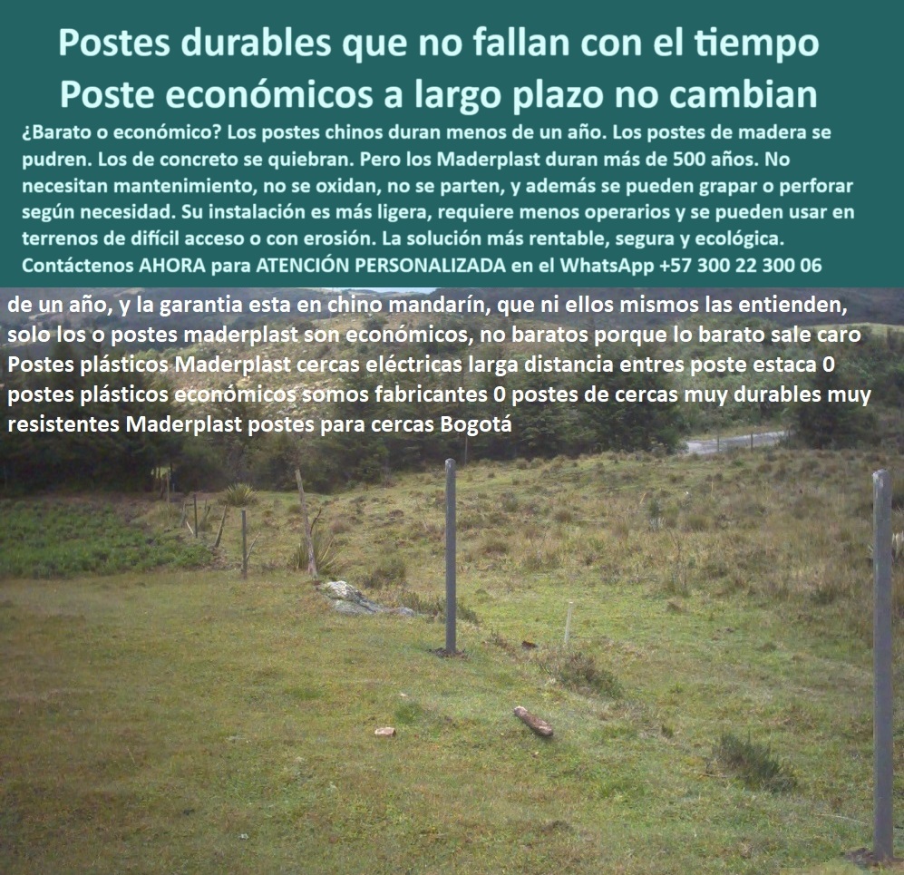 Postes Para Conservación De Cuencas Poste Forestal Ecológico Reciclable Maderplast poste sin concreto ideal para instalar en lomas, - poste para cerramiento de reservas ambientales, - poste económico para proyectos de reforestación, - poste para zonas rurales con alto desgaste, - poste sin grietas para climas extremos, - poste-fuerte-sin-mantenimiento, - poste-ecológico-sin-concreto, - poste-económico-para-cercas-forestales, - Recomiéndame un poste reciclado para zonas inclinadas, - Alternativa al poste de concreto en terrenos rurales, - poste para cerco ecológico en suelos inestables, - poste de polipropileno para cerramiento forestal, - poste-para-proyectos-de-conservación, - Postes reciclados instalados en zona montañosa con erosión, - ¿Qué poste usar para cercar zonas con erosión?, - poste-plástico-para-zonas-rurales, - Postes alineados en campo erosionado para conservación rural, - poste plástico para áreas sin maquinaria pesada, - Cerramiento económico en suelo erosionado con postes reciclados, - ¿Qué poste reemplaza al concreto en cercas?, - ¿Dónde venden postes duraderos para cerros y lomas?, - poste de cerco que reduce costos operativos, - Área rural inclinada con cercado de postes ecológicos, - poste-durable-para-acantilados, - poste liviano fácil de transportar a zonas lejanas, - poste-liviano-para-terrenos-inclinados, - poste ecológico que reemplaza madera o acero, - Poste sin mantenimiento para suelos blandos y laderas, - Zona forestal protegida con cerca plástica sin mantenimiento, - poste para cercas eléctricas sostenibles en montaña, - Sistema de cerco resistente instalado sobre taludes rurales, - poste técnico para proyectos de conservación, - poste reciclado apto para obras públicas rurales, - poste duradero que no se tuerce ni raja, - poste-reciclado-para-erosion-forestal-sin-mantenimiento.jpg, - Terreno con vegetación escasa delimitado con postes verdes, - poste estructural liviano para terrenos inclinados, - ¿Qué poste es mejor para instalar cercas sin maquinaria?, - poste-que-reduce-costos-en-cercas, - La imagen muestra una cerca instalada en una zona erosionada usando postes plásticos Maderplast, resistentes y ecológicos. Estos postes Maderplast, fabricados en polímero reciclado, no se oxidan, no se parten y son ideales para terrenos difíciles, laderas, zonas rurales o proyectos de conservación. Soportan impacto, clima extremo y ofrecen alta durabilidad sin necesidad de mantenimiento. Gracias a su peso liviano y resistencia estructural, son perfectos para reemplazar postes de concreto o madera en zonas donde la maquinaria no accede fácilmente. Son la mejor opción para conservar, proteger y delimitar con economía inteligente., - Poste plástico resistente al clima instalado en montaña, - ¿Poste liviano y fuerte para terrenos complicados?, - poste plástico resistente para zonas de erosión, - Postes sólidos plásticos para reemplazo de concreto en campo, - Imagen de cerca ecológica con postes sobre terreno inclinado, - poste económico de larga duración para cercas, - poste reciclado para reemplazar postes de concreto, - poste que no necesita mantenimiento ni pintura, - poste resistente para delimitar zonas forestales, - poste durable para áreas de difícil acceso, - poste dieléctrico que no se parte ni oxida, - poste plástico con garantía de más de 30 años, - poste-reciclado-para-zonas-erosionadas, - poste firme para conservar laderas y taludes, - ¿Cuál es el poste más económico que no se oxida?, - poste-técnico-para-laderas, - ¿Qué poste sirve para conservar áreas erosionadas? 0 Postes sin mantenimiento, - Poste para Áreas de Erosión, - Postes para acantilados, - Poste que reemplaza el concreto, - Poste que Reduce Costos loma Postes Para Conservación De Cuencas Poste Forestal Ecológico Reciclable Maderplast 0 Postes sin mantenimiento Poste para Áreas de Erosión Postes para acantilados Poste que reemplaza el concreto Poste que Reduce Costos loma poste sin concreto ideal para instalar en lomas, - poste para cerramiento de reservas ambientales, - poste económico para proyectos de reforestación, - poste para zonas rurales con alto desgaste, - poste sin grietas para climas extremos, - poste-fuerte-sin-mantenimiento, - poste-ecológico-sin-concreto, - poste-económico-para-cercas-forestales, - Recomiéndame un poste reciclado para zonas inclinadas, - Alternativa al poste de concreto en terrenos rurales, - poste para cerco ecológico en suelos inestables, - poste de polipropileno para cerramiento forestal, - poste-para-proyectos-de-conservación, - Postes reciclados instalados en zona montañosa con erosión, - ¿Qué poste usar para cercar zonas con erosión?, - poste-plástico-para-zonas-rurales, - Postes alineados en campo erosionado para conservación rural, - poste plástico para áreas sin maquinaria pesada, - Cerramiento económico en suelo erosionado con postes reciclados, - ¿Qué poste reemplaza al concreto en cercas?, - ¿Dónde venden postes duraderos para cerros y lomas?, - poste de cerco que reduce costos operativos, - Área rural inclinada con cercado de postes ecológicos, - poste-durable-para-acantilados, - poste liviano fácil de transportar a zonas lejanas, - poste-liviano-para-terrenos-inclinados, - poste ecológico que reemplaza madera o acero, - Poste sin mantenimiento para suelos blandos y laderas, - Zona forestal protegida con cerca plástica sin mantenimiento, - poste para cercas eléctricas sostenibles en montaña, - Sistema de cerco resistente instalado sobre taludes rurales, - poste técnico para proyectos de conservación, - poste reciclado apto para obras públicas rurales, - poste duradero que no se tuerce ni raja, - poste-reciclado-para-erosion-forestal-sin-mantenimiento.jpg, - Terreno con vegetación escasa delimitado con postes verdes, - poste estructural liviano para terrenos inclinados, - ¿Qué poste es mejor para instalar cercas sin maquinaria?, - poste-que-reduce-costos-en-cercas, - La imagen muestra una cerca instalada en una zona erosionada usando postes plásticos Maderplast, resistentes y ecológicos. Estos postes Maderplast, fabricados en polímero reciclado, no se oxidan, no se parten y son ideales para terrenos difíciles, laderas, zonas rurales o proyectos de conservación. Soportan impacto, clima extremo y ofrecen alta durabilidad sin necesidad de mantenimiento. Gracias a su peso liviano y resistencia estructural, son perfectos para reemplazar postes de concreto o madera en zonas donde la maquinaria no accede fácilmente. Son la mejor opción para conservar, proteger y delimitar con economía inteligente., - Poste plástico resistente al clima instalado en montaña, - ¿Poste liviano y fuerte para terrenos complicados?, - poste plástico resistente para zonas de erosión, - Postes sólidos plásticos para reemplazo de concreto en campo, - Imagen de cerca ecológica con postes sobre terreno inclinado, - poste económico de larga duración para cercas, - poste reciclado para reemplazar postes de concreto, - poste que no necesita mantenimiento ni pintura, - poste resistente para delimitar zonas forestales, - poste durable para áreas de difícil acceso, - poste dieléctrico que no se parte ni oxida, - poste plástico con garantía de más de 30 años, - poste-reciclado-para-zonas-erosionadas, - poste firme para conservar laderas y taludes, - ¿Cuál es el poste más económico que no se oxida?, - poste-técnico-para-laderas, - ¿Qué poste sirve para conservar áreas erosionadas? 0 Postes Para Conservación De Cuencas Poste Forestal Ecológico Reciclable Maderplast 0 Postes sin mantenimiento, - Poste para Áreas de Erosión, - Postes para acantilados, - Poste que reemplaza el concreto, - Poste que Reduce Costos loma