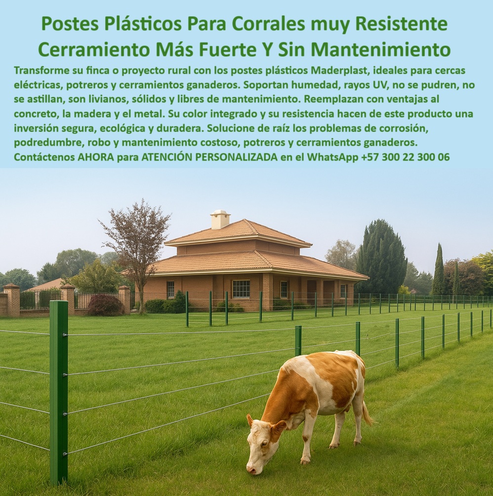 Postes Para Corral Portátil Postes Plásticos Corral Postes Tablas Varetas Maderplast poste fuerte que no se oxida ni se astilla, - poste reciclado usado en finca sin mantenimiento, - poste reciclado para divisiones de potreros, - poste ligero y sólido sin romperse, - comparación entre poste de concreto y poste reciclado, - poste rural sin pintura con estética conservada, - poste-para-potreros-elegantes, - ¿Qué poste sirve para cerco decorativo sin mantenimiento?, - cercado elegante con postes plásticos sólidos, - En la imagen se aprecia una instalación real con más de 20 años de uso continuo en el conjunto cerrado La Vuelta del Río, vía Cota–Cajicá, Cundinamarca. Los postes plásticos de Maderplast continúan firmes y funcionales, habiendo requerido solo una repintada superficial. Son ideales para corrales decorativos y resistentes, sin mantenimiento, sin óxido, sin pintura y 100% reciclables. La tecnología Maderplast ofrece una solución definitiva para dividir potreros o cerramientos rurales sin los costos ni fallos de la madera o el concreto. Una inversión segura para fincas ganaderas y residenciales con visión a largo plazo., - poste que delimita prado sin esfuerzo, - ¿Poste plástico para potrero que no necesite pintura?, - poste para cercado sin riesgo de corrosión, - poste reciclado para dividir potreros en zona rural, - poste plástico en zona residencial ganadera, - poste-para-conjunto-cerrado, - poste resistente para finca ganadera moderna, - poste verde brillante frente a casa campestre, - Poste_Plástico_Corral_Decorativo_Cota_Cajicá_20_Años_Sin_Mantenimiento.jpg, - poste plástico para corral en finca turística, - poste reciclado que conserva su forma original, - poste ideal para corral ganadero sin repintar, - poste ganadero para proyectos con bajo mantenimiento, - corral con estética y resistencia comprobada, - poste-para-finca-turística, - poste para cerca sin mantenimiento estructural, - poste duradero para electrificación segura en potrero, - poste plástico para reemplazar madera y concreto, - poste-sin-mantenimiento-rural, - poste que reemplaza postes de concreto en corral, - poste para cercado decorativo sin pintura, - poste ganadero sin pudrición ni robo, - ¿Cómo instalar un corral sin usar madera ni concreto?, - poste-resistente-sin-óxido, - estructura plástica sin fracturas visibles, - poste reciclado decorativo para finca rural, - poste-plástico-corral, - instalación de cerco ecológico con poste plástico, - instalación ganadera con postes alineados, - poste con color integrado sin decoloración, - cercado decorativo para finca con poste sin óxido, - poste ideal para cerramiento ornamental ganadero, - ¿Dónde compro poste que no se oxide ni se pudra?, - poste seguro para zonas con humedad constante, - cerca funcional y estética en zona residencial rural, - poste-para-cerca-sin-pintura, - poste-reciclado-decorativo, - poste-con-color-integrado, - poste para finca que dura más de 20 años, - poste-ganadero-cota-cajicá, - poste ecológico con estética rural duradera, - ¿Cuál es el mejor poste para cercas en fincas ganaderas?, - poste técnico para división de áreas en campo, - poste plástico para vacas sin electrificación, - poste que combina con pasto y entorno rural, - poste para cerco perimetral decorativo rural, - poste sin mantenimiento para conjunto cerrado 0 cómo instalar Corral con poste reciclado, - cómo instalar Corral cerco eléctrico en finca ganadera, - comparación-poste-plástico-concreto-Corral 00 Postes Para Corral Portátil Postes Plásticos Corral Postes Tablas Varetas Maderplast 0 cómo instalar Corral con poste reciclado cómo instalar Corral cerco eléctrico en finca ganadera comparación poste plástico concreto Corral poste fuerte que no se oxida ni se astilla, - poste reciclado usado en finca sin mantenimiento, - poste reciclado para divisiones de potreros, - poste ligero y sólido sin romperse, - comparación entre poste de concreto y poste reciclado, - poste rural sin pintura con estética conservada, - poste-para-potreros-elegantes, - ¿Qué poste sirve para cerco decorativo sin mantenimiento?, - cercado elegante con postes plásticos sólidos, - En la imagen se aprecia una instalación real con más de 20 años de uso continuo en el conjunto cerrado La Vuelta del Río, vía Cota–Cajicá, Cundinamarca. Los postes plásticos de Maderplast continúan firmes y funcionales, habiendo requerido solo una repintada superficial. Son ideales para corrales decorativos y resistentes, sin mantenimiento, sin óxido, sin pintura y 100% reciclables. La tecnología Maderplast ofrece una solución definitiva para dividir potreros o cerramientos rurales sin los costos ni fallos de la madera o el concreto. Una inversión segura para fincas ganaderas y residenciales con visión a largo plazo., - poste que delimita prado sin esfuerzo, - ¿Poste plástico para potrero que no necesite pintura?, - poste para cercado sin riesgo de corrosión, - poste reciclado para dividir potreros en zona rural, - poste plástico en zona residencial ganadera, - poste-para-conjunto-cerrado, - poste resistente para finca ganadera moderna, - poste verde brillante frente a casa campestre, - Poste_Plástico_Corral_Decorativo_Cota_Cajicá_20_Años_Sin_Mantenimiento.jpg, - poste plástico para corral en finca turística, - poste reciclado que conserva su forma original, - poste ideal para corral ganadero sin repintar, - poste ganadero para proyectos con bajo mantenimiento, - corral con estética y resistencia comprobada, - poste-para-finca-turística, - poste para cerca sin mantenimiento estructural, - poste duradero para electrificación segura en potrero, - poste plástico para reemplazar madera y concreto, - poste-sin-mantenimiento-rural, - poste que reemplaza postes de concreto en corral, - poste para cercado decorativo sin pintura, - poste ganadero sin pudrición ni robo, - ¿Cómo instalar un corral sin usar madera ni concreto?, - poste-resistente-sin-óxido, - estructura plástica sin fracturas visibles, - poste reciclado decorativo para finca rural, - poste-plástico-corral, - instalación de cerco ecológico con poste plástico, - instalación ganadera con postes alineados, - poste con color integrado sin decoloración, - cercado decorativo para finca con poste sin óxido, - poste ideal para cerramiento ornamental ganadero, - ¿Dónde compro poste que no se oxide ni se pudra?, - poste seguro para zonas con humedad constante, - cerca funcional y estética en zona residencial rural, - poste-para-cerca-sin-pintura, - poste-reciclado-decorativo, - poste-con-color-integrado, - poste para finca que dura más de 20 años, - poste-ganadero-cota-cajicá, - poste ecológico con estética rural duradera, - ¿Cuál es el mejor poste para cercas en fincas ganaderas?, - poste técnico para división de áreas en campo, - poste plástico para vacas sin electrificación, - poste que combina con pasto y entorno rural, - poste para cerco perimetral decorativo rural, - poste sin mantenimiento para conjunto cerrado 00 Postes Para Corral Portátil Postes Plásticos Corral Postes Tablas Varetas Maderplast 0 cómo instalar Corral con poste reciclado, - cómo instalar Corral cerco eléctrico en finca ganadera, - comparación-poste-plástico-concreto-Corral 00